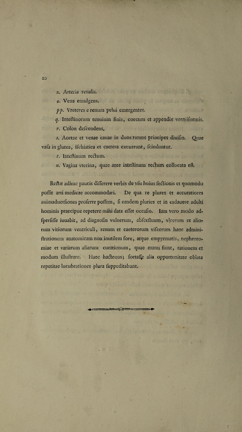 iu Arteria renaiis. o. Vena emulgens. pp. Vreteres e renum pelui emergentes. q. Intedinorum tenuium finis, coecum et appendis vermiformis. r. Colon defcendens. s. Aortae et venae cauae in duos ramos principes diuifio. Quae vafh in glutea, ifchiatica et caetera excurrunt, fcinduntur. t. Intedinum re edum. n. Vagina vterina, quae ante intedinum recdurii collocata efl Redat adhuc paucis diderere verbis de vfu huius feclionis et quomodo poflit arti medicae accommodari. De qua re plures ct accuratiores animaduerfiones proferre podem, fi eandem pluries ct in cadauere adulti hominis praecipue repetere mihi data edet occafio. Iam vero modo ad* fperfide iuuabii, ad diagnodn vulnerum, abfceduum, vlcerum ct alio¬ rum vitiorum ventriculi, renum ct caeterorum vifcerum hanc admini- drationem anatomicam non inutilem fore, atque empyematis, nephroto- miae et variarum aliarum curationum, quae manu fiunt, rationem et modum illudrarc. Haec hadlenus; fortace alia opportunitate oblata repetitae lucubrationes plura fuppeditabunt. Hlfc. - I