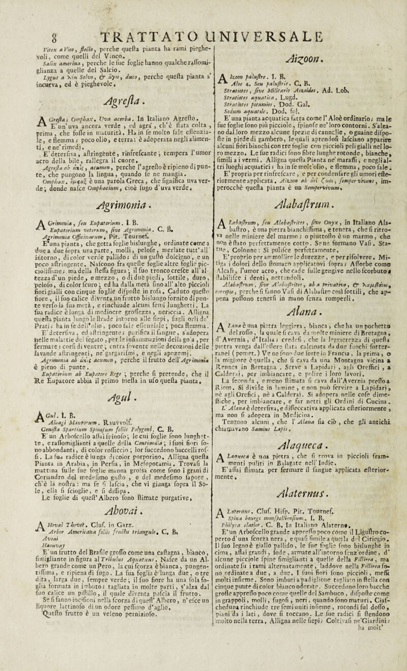 Vitex aViec, fletto, perche quefta pianta ha rami pieghe¬ voli, come quelli del Vinco. Salìx carmina, perche le lue foglie hanno qualche rattòmi- glianza a quelle del Salcio. Lygus a \m Solvo, & aya, duco„ perche quella pianta s’ incurva> ed è pieghevole. Agre/la. Grefla ; ÒmphaX, V va acerba. In Italiano Agrétto. E’un’uva ancora verde , ed agra' , eh*è ttata colta , prima, che fotte in maturità. Ha in fe molto Tale efienzia- Je, e Semmai poco olio, e terra: è adoperata negli alimen¬ ti, e ne’rimedj. E’deterfiva, attringènte, rinfrefeante ; tempera F umor acro della bile, rallegra il cuore, Agrefla ab àule, acumm, perche F agretto è ripieno di pun¬ te, che pungono la lingua, quando fe ne mangia. Omphax. è una parola Greca, che fignifica uva ver¬ de i donde nafee Omphacium, cioè fugo d’uva verde, Agrimonia. A Gr imeni a, feu Eupatorìum. 1 B. * Eupatorium veterhm, (tve Agrimonia. C. tt. Agrimonia OffìcinwHm, Pit. Tournefi, E^una pianta, che getta foglie bislunghe, ordinate carne a duea due fopra una parte, molli, pelofe, merlate tutt’ all’ intorno, dicolor verde pallido; di unguttò dolcigno, e un poco aftringente. Nafcono fra quelle fogliealtre foglie pic- cioiittìme; ma della fletta figura ; il fuo tronco crefce all’al¬ tezza d’un piede, e mezzo, o di duè piedi, fiottile, duro, pelofo, di color feuro ; ed ha dalla metà fino all’alto piccioli fiori gialli con cinque foglie difpofte inrofa. Caduto quello fiore , il fuo calice diventa un frutto bislungo fornito di pun¬ te verfo la fuametà, e rinchiude alcuni ferni lunghetti. La fua radice è lunga dimediocre grettezza, nericcia. Alligna quella pianta lungo le ttrade intorno alle fiepi, figli orli de’ Prati; ha in fe dell’olio , poco tale ettenziale ; poca flemma. E’deterfiva, ed attingente; purifica il fangue, s’adopera irelle malattie del fegato , per le infiammazioni della go'a , per Fermare 1 corfi di ventre ; entra fovente nelle decozioni delle lavande afìrmgenti, ne’girgarifmi, e negli apozemj. Agrimonia ab ùx'i( acumen, perche il frutto dell' Agrirnonia è pieno di punte. Eupatorium ab Eupatore Rege ; perche fi pretende, che il 3Re Eupatore abbia il primo metta in ufo quefta pianta. Kguì. ì. é. ALagi Maurorum. Rauvvolf. Gentfla Sparrium Spmojum foliis Folygoni. C. B. E’un Arbolcello attaifpinofo; lecui foglie fono lunghet¬ te, eraflomiglianti a quelle della Centinodia\ j fuoi fiori fo¬ no abbondanti, di color rofficcio ; lor fuccedono baccelli rof- fi . Lalua radice è lunga dicolor porporino. Alligna quefta Pianta in Arabia, in Perfia, in Mcfopotamia. Trovafi la mattina fulle lue foglie manna grofsa come fono i grani di Coriandro del medelìmo gatto , e del medefimo fapore , eh'è la noftra : ma fe fi lafcia , che vi giunga fopra il Só¬ le, ella fi feioglie, e fi dittipa. Le foglie di quett’Albero fono ftimate purgative, Ahovai. Hovai Thevet, Ciuf, in Garz. Arbor Americana foliis frutta triangulo, C, Be Avoat Haouvay E’ un frutto del Brafile grotto come urta caftagnà , bianco, fimigliante in figura al Tribulus Aquatxus. Naìce da Un Al¬ bero grande come un Pero, laeuifeorza è bianca, pungen- tifiima, e ripiena di fugo. La fua foglia è lunga due, otre dita, larga due, fempre verde; il fuo fiore ha una fola fo¬ glia formata in imbuto; tagliata in molte parti, s’alza dal fuo calice un pittillo, il quale diventa pofcia il frutto. Se fi fa nno incttìoni nella feorza d i quett’ Albero, n’ efee un liquore lattinofo di un odore pettimo d’aglio, 'Quetto frutto è un veleno perniziofo. Aizoon. barn pàluftre. I. B. Aloe 4. Seu paluflris. C. B. Stratiotes, five Militarli Atxoides, Ad. Lob, Stratiótes aquatica. Lugd. Strarivtes potamios. Dod. Gal, Sedum aquatile. Dod. fol. E’ una pianta acquatica fatta Come V Aloè ordinario; ma le fue foglie fono più picciole, fpinofe ne’ loro contorni. S’alza- nodal.loro mezzo alcune fpezie di cannelle, o guaine difpo¬ fte in piede di gatnbero, le quali aprendoli lafciano apparire alcuni fiori bianchi con tre foglie con piccioli peli gialli nel lo¬ ro mezzo* Le fue radici fono fibre lunghe rotonde, bianche# Umili a i vermi. Alligna quefta Pianta ne’maraftì, eneglial- tri luoghi acquatici ; hain lemolt’olio, e flemma , pocofale. E’ propria per rinfrefeare , e per condenfare gli umori ette- dormente applicata. Aitoon ab òsi ìfm\,fempervtvens, im¬ perocché quefta pianta è un Sempervivum* Al ab a fi mm. A Labnflrum, feu Alabaflritei , five Onyx, in Italiano Ala- ^ baftro, è una pietra bianchi (Furia, e tenera, che fi ritro¬ va nelle miniere del marmo; opiuttotto è un marmo, che n°n è fiato perfettamente cotto. Sene formano Vali. Sta- tue, Colonne: Si pulifce perfettamente. E’proprio per airmóMìre le durezze, e per ri fol vere. Mi¬ tiga i dolori dello ftomacó applicatovi fopra; Attorbe come Alcali, l’umor acro, che cade fullegengive nello feorbuto# ftabilifce i denti, nettandoli. Alàb a (Ir um, five AG.baftntes , ab a privativo, & 9 compio, perche fi fanno Vafi di ALbattr^ così fottili, che ap¬ pena pottono tenerfi in mano fenza romperli. Alana. A lana è una pietra leggiera, bianca, Che ha un pochette» del rotto, la quale fi cava da molte miniere di Bretagna * d’Avernia, d’Italia; credefi , che la HgeiereZza di quefta pietra venga dall’efiere ttata calcinata da due fuochi fotter¬ ranei ( pomet. ) Ve ne fono due forte ir. Francia , la prima, e la migliore è quella, che fi cava da una Montagna vicina & Rennes in Bretagna . Serve a Lapidari , agli Orefiìci , a Calderai, per imbiancare, e polire i loro lavori. La feconda , e meno [limata fi cava dall’Avernia preliba Riom. Si divide in lamine, e non può fervire a Lapidari# nè agli Orefici, nè a Calderai. Si adopera nelle cofe djme- ftiche, per imbiancare, e far netti gli Ordini di Cucina. L'Alana è deterfiva, e ditteccativa applicata efteriormente , ma non fi adopera in Medicina. Tengono alcuni , che F Alana fu ciò , che gli antichi chiamavano Samius Lapis. Àlacjueca. A Laaueca è una pietra , che fi rrova in piccioli fram- ^ menti puliti in Balagate nell’Indie. E’aftai (limata per fermare il fangue applicata efterior- mente • Al ater . 'Laternus. Ciuf. Hifp. Pit. Tournef. Spina bonrgi monfpellienfium. I, B. Rbilyca elatior. C. B. In Italiano Alaterno, E’Un Arbofcello grande appretto poco come il Liguìftro Co- pertod’una feorza nera , e qua fifoni le a quella ddCiriegio. Il fuo legno è giallo pallido, le fue foglie fono bislunghe in cima, aliai grandi, lode , armatealfintorno fenz’ordine, d’ alcune picciole fpine fimiglianti a quelle della Fillirea, ma ordinate fu i rami alternatamente, laddove nella Fillirea fo¬ no ordinatea due, a due. f fuoi fiori fono piccioli, metti molti itifieme. Sono imbuti a padiglione tagliato in (Iella con cinque punte di color bianco odorate. Succedono loro bacche grotte appretto poco come quelle del Sambuco , difpoftecòrne in grappoli, molli, fugnfi , neri, quando fono maturi» Ciaf- cheduna rinchiude tre femi uniti in fieme , rotondi fui dottò, piani da i lati, dove fi toccano. Le fue radici fi ttendono molto nella terra. Alligna nelle fiepi; Coltivafi ne’Giardini: ha molt*
