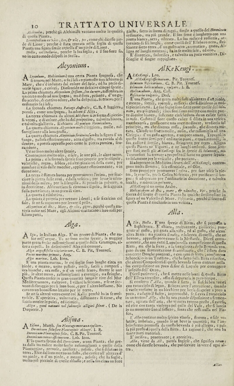 IO Alchimìld, perchè gli Alchimirti vantano molto le qualità di quella Pianta. , ^ . Leontopodium ex XÙav, Leo, & 7raf , 5 come chi dicefle pie¬ de di Lione; perche è (lata trovata nella foglia di quella Pianta una figura limile a quella d’un piede di Lione . Stella, velStellarla, perche lafuafoglia, Q il fuofiore io, no in certo modo difporti in Stella « Alcyonium. giallo, fatto in forma di raggi, fimile a quello del Dorontcum ordinario, ma più grande. Il fuo feme è lunghetto con una piuma bianca , aera, odorata. La lua radice c rofiiccia, at¬ torniata di fili lunghi, come quelli dell’Elleboro nero, llri- feiante fiotto terra , d’ un gufò acro ,aromatico , grato. Ah ligna ne’luoghimohtani ; ha in fe molto fiale , edolio. E’ diuretica, fudorifica , e talvolta un poco vomitiva, Di'* feioglie il fangue rappigliato. AlKeKengì - À Leyonwm, Halcionìum è una certa Pianta fpugnolà, che ^ fi truova nel Mare, o fu i lidi > 0 piuttolìo unafehiumadi Mare, che s’è indurata dal colore del Sole, ed ha preio di- verfe figure , e colori. Diofcoride ne deferive cinque fpezie. La prima chiamata Alcyonmm fpìjfum, feu durame raflembra in un certo modo ad una (pugna ; ma e dura , pelante, d un gu¬ filo acerbo, di cattivo odore, che ha dei pelce. Si truova per I ordinario lu i lidi. La fecónda chiamata Favago Aufiralis, C.B. è leggiera > porofa , come una fpugna, ha odore d’Alga. _ . Laterza chiamata da alcuni Mikftttm è in forma di piccio¬ li vermi, e di colore ,che ha del porporino, talvoltabianca, e talvolta gialliccia. Si chiama Alcyonìum Vermkulare. La quarta chiamata Alcyonmm molle è leggiera, molle, raf- Somigliante alla lana grafia. „ r La quarta chiamata Alefon'mm foraìninofam ha la figura a un fungo, pafiofaefieriormente, acraalgufio , ma ruvida aldi dentro, e porofa appreflo poco come la pietra pomice, fen- za odore. Ve ne fono molte altre fpezie. Contengono molto olio, elale, le une più, le altre meno. La prima , e la leconda fpezie fono proprie per le rifipoie, volatiche, rogna, lebbra, ed altri pizzicori della cute ; per mondare il vifo dalle macchie, applicate cfteriormente, o in decozione. La terza è (limata buona per promuovere l’orina, per tac¬ ciare la pietra dalle reni, e dalla vefcica ; per levar le ofiru- zioni della milza , per laldropifia. Si prende in polvere , o in decozione. Abbrucciata fa ritornare il pelo , (e fi applica Tu Ila parte lavata in un poco di vino. La quarta è rifolutiva . La quinta è propria per nettare i denti; efe fi calcina col fiale, fe ne fa unguento per levare il pello. Alcyonìum ab «Xr, Mare , & \ùe, gigno , perchè quella ma¬ tèria nalce nel Mare, egli Alcioni vi attacano i loro nidi per ( liìoro parti, LKeKengt. Lon. AlKeKengìefficìnarum. Pit. Tournef. Solarium Vefcicarium. C. B. Pit. Tournef. Solarium halicacabum, vulgare. I. B. Halle ac abum. Ang, Cali. Vef eie aria vulgaris, Dod. . ■ È’una Pianra, che getta molti furti all’altezza d’ufi piede* e mezzo , fiottili, rotondi, rofiìccii che fi dividono in mol¬ ti piccioli rami, Le fue foglie fono fatte come quelle del Sola, nitm, ma più grandi ; i fuoi fiori fono rofette con molte pun¬ te di color bianco , foftenute ciafcheduna da un calice fatto invafo. Caduto il fiore quello calice fi dilata in una vefcica membranofa, grolla come una noce mediocre, verdiccia fui principio, ma che diventa roda, fecondo, che diventa ma¬ tura. Chiude un frutto molle, rollo, cherafiomigliaad una Ciriegia ; d’un gufto agretto, e un poco amaro. Trovanfiin quello frutto femi per f ordinario piani, e quafi rotondi.; la fua radice è lottile, bianca, ilringente per terra .Alligna quella Pianta ne’Vigneti, e ne’luoghi ombrofi. Sono fern- pre fiati inerti gli AlKeKengì fra le fpezie di Solarium(, ma Tournefort ha trovato a prcpofito il farne un genere fepara- to follmente per le vefciche, che portano. Si adoperano in Medicina i frutti dell’ AlKeKengì ; conten¬ gono molta flemma ; fiale efienziale, ed Olio. Sono propri per promuover l’orina, per fare ufeir la pie¬ tra , la renella, perla Colica Nefritica , per purificareil (an¬ gue ; fi adoperano per 1* ordinarie in decozione, e talvolta lecchi, e ridotti in polvere, AlKeKengì è un nome Arabo. Halicacabum ab a\g , mare , & , Vas , perche la feorza del frutto di quella Pianta ha qualche fimilitudine in figura ad un Vafcello di Mare. Vef cu aria, perchè il frutto di quella Pianta è rinchiulo in una vefcica, Alla. Alga. A j in Italiano Alga. E’un genere di Pianta, che na- * Ice nell’acque. Ve ne fono molte Ipezie , la maggior parte getta foglie rafiomiglianti a quelle della Gramigna, al¬ tre a capelli. Io deferiveròf Alga più comune. Alga anguftìfolìa vifriariorum, C. B, Pit, Tournef. Fucus marìnusprimus, Ang. A>ga marina. Lob. Icon. E’una pianta marina, le cui foglie fono lunghe circa un piede, e mezzo, unite paltofe, molli, facili a romperli , ora bianche, ora rode, o d’un verde feuro, ftrette le une più, le altre meno, rafibmiglianti acoreggie, o a Aringhe. Oue Ha Pianta crefce in gran quantità lungo le rive del Mar Mediterranneo, e altrove. I villani la feccano, efenefer- vono di foraggio per li loro buoi, e per l’altro befiiame. Ne cavano un buonifiimo letame per le terre. Se ne fa altresì vetro come col Kalj > perchè ha in fe mol- Tofale. E’aperitiva, vulneraria, diflecante» Si tiene, che faccia morire le pulci, ed i cimici. Aliga , tymd natanti vel fubmerjo alligarì foleat . ( De la Duquerie. ) AÌìfma. Liftma, Matth. feti Plantago montana ejufdem. Do >onic um folio fere Plantaginis oblongo. I. B. Doronìcnr» Plantaginis folio. C. B. Pit. Tournef. Dcronìcum m'tnus officinarum . Lob. Icoil. E’ la quarta fpezie del Doronicum, cuna Pianta, che get¬ ta dalla tua radice molte foglie rafiomiglianti a quelle della Piantaggine, nervole, grofiette, pelofe , che fi dilataao in terra . E(ce dal loro mezzo un furto , che crefce all’ altezza d’ un piede^, o d’un piede, e mezzo, pelofo; che ha foglie, molto più picciole di quelle abbailo; e nella fua cinaa un fiore Ai-la, Halla. E’una fpezie di Birra, che fi prepal^n a Inghilterra. E’chiara> trafparente, gialliccia, pun¬ gente al gurto, più grata alla villa, ed al gufio, che alcun altra Birra: ma pizzica il nafo , e la bocca di quelli, che ne bevono, appreflo porocome Fa la Moflarda . Dicefi comu¬ nemente ,che non entri Lupulo nella compofizione di quella Birra, ma che la forza, e la fottigliezza della Bevanda ven. gano da una fermentazione rtraordinaria , che 1*è fiata data con certe Droghe pungenti, e con rami di feopa ; nondimeno SchoocKioin un Trattato , che ha fatto fulla Birra riferifee, che alcuni Compofitori di quella bevanda fanno entrare nella fua compofizione un poco di fior di Lupulo per correggere l’infipido dell’ Orzo. Dicefi parimenti, che fi mette nelle botti di quella Birra dell’ Ellera terreflre, affin di depurarla in poco tempo . Si conferva 1' Alla, quando è fatta, in fi afe hi ben turati con turacciolo di legno. Bifogna aver l’attenzione, quando fi vuole verfarne in un bicchiere per berla di aprire a poco a poco, eadagio il fiafeo ; imperocché, fe fi cava il turacciolo in un tratto/’ Alla, che ha una grande difpofizione a fermen¬ tare , agitata dall’ aria , che vi entra troppo predo , fi rarefa, ed efee con tanta violenza pel collo del Vaio , cheli lancia in un momento fino al foffitto, fenzache redi nulla nel Fia¬ feo. L'Alla contiene molto fpirito vinofo , flemma, efale vo¬ latile; imbriaca, quando lene beve in quantità; ma l’im¬ briachezza promorta da quella bevanda è più allegra, epaf- fa più predo di quarta della Birra . La ragioneè, che non ha tante parti materiali. E'incifiva, penetrante; e aperitiva. Alla, viene da All, parola lnglefe , che fignifica totano; come chidicertebevanda, che puòfervire inveced’ogni al¬ tra . Alitai