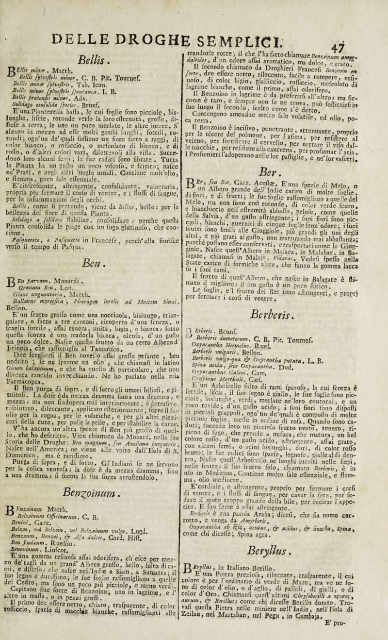 ( DELLE DROGHE SEMPLICI. Bellis w 47 T>Ellis minor. Matth. Bellis fylveflris minor, C. B. Pif. Tournef. Bellis minor fylveflris, Tab. Icon. Bellis minor fylveflris fpontanea. I. B. Bellis prutenfis minor, Adv. Solivago confoUda fpecies . Brunf. E’una Pianterella bada, le cui foglie fono picciole, bis¬ lunghe, lifcie, rotonde verfo la loro eftremità, grofie, di- fìefe a terra; le une un poco merlate, le altre intere. S’ alzano in mezzo ad effe molti gambi lunghi, fottili, ro¬ tondi; ogn’un de’quali folliene un fiore fatto a raggi, di color bianco, o roflìccio, o mefcolato di bianco, e di rollo, o dValtri colori varj, dilettevoli alla villa. Succe¬ dono loro alcuni femi ; le lue radici fono fibrate . Tutta la ^ Pianta ha un guflo un poco vifcofo, e fcipito; nafce ne’Prati, e negli altri luoghi umidi. Contiene moltolio, e flemma, poco lale eflenziale. E’rinfrefcante, allringente, confolidante, vulneraria, propria per fermare il corfo di ventre, e i fluid di fangue, per le infiammazioni degli occhi. Bellis, come li pretende, viene da Bellus, bello; per la bellezza del fiore di quella Pianta. Soltdago a folidare ihibilire, confolidare ; perche quella Pianta confolida le piage con un fugo glutinoso, che con¬ tiene . Pafquerete, o Pafquette in Francefe , perch’ella fiorifce verfo il tempo di Pafqua. mndorfc rotte; .1 che l’ha fatto chiamareBmuìrmm.mV. dalodes, i un odore aliai aromatico, ma dolce, »Kraro^ Il fecondo eh,amato da Droghieri Francef, „ fone, dee effere netto, rilucente, facile a rompere, refi- nolo, d, color bigio, gialliccio, rodicelo, mefcolato di lagnine h,anche, come il primo, aflai odorifero. Il Benzoino ,n lagrime è da preferirli all'altro; ma fie¬ li0111? e raro, e fempre non fe ne trova, può fofiituirli in luo luogo il fecondo, feelto come s'è detto ca^e?rae”SOn° amenJue m°lt0 fa,e volati,e> ed olio, po¬ li Benzoino è incifivo, penetrante, attenuante, proprio per le ulcere del polmone, per l’afima, per refiftere al fcmacchfe ,fell°> P« «ertale Hvifo dall jemaccnie, per reiiltere alla cancrena, per profumar farli I Profumieri! adoperano nelle Ior paftiglie, e nelor vafe«L‘ Ber. B Fr’ Eor' Garf* Scolte. E’una fpezie di Melo, o un Albero grande dell’Indie carico di molte foglie, dl C fuefog,'e rafiTomigliano a quelle del Melo, ma non fono cosi rotonde, di color verde feuro del a Salvia, d un gallo allringente; i Tuoi fiori fono pic- frnlrì rianc^xBguef,nit* dl Cinque toglie fenz’ odore ; ifuoi a-tri rTAmlyl e S,UggÌ0,e’ grandi gli uni degli 1 .1’' P/v gra^ al guflo, non maturando mai abballanza; £5l/ianoefl?rconfcrvati, e trafportati come le Giug¬ giole Nafce quell*Albero in Malaca, in Malabar, in Ba- lagate, chiaman in Maialo, Vtdaras. Vedefi fpelTo nella ^tate carico di formiche alate, che fanno la gomma lacca iu i luoi rami. I! frutto di quell;Albero che nafce in Balagate è (li¬ mato il migliore; il luo guflo e un poco flitico. no . r ie,.e i f;u“° del -Ber tono allringenti, e proprj p^r termarc i cord di ventre. Ben. En parva/». Monardi . Granar» Ben. Lon. Glans unguentaria,. Matth. Baliamis myrepflca ; Pharagon incolis ad Monte/» Sinai. Bellon. E’un frutto grofio come una nocciuola, bislungo, trian¬ golare, o fatto a tre cantoni, ricoperto d’una teerza, o fcaglia fottile , affai tenera, unita, bigia, o bianca; fotto quella feorza è una madorla bianca , oleofa, d’ un guflo un poco dolce. Nafce quello frutto da un certo Alberod’ Etiopia, che raflomiglia al Tamarifco. Dee tceglierfi il Ben novello aliai groffo pefante , ben nodrito ; fe ne fpreme un olio , che chiamafi in latino oleum balaninum, e che ha quello di particolare, che non diventa rancido invecchiando. Ne ho parlato nella mia Farmacopea. Il Ben purga di fopra, e di f&tto gli umori biliofi, epi- tuitoli. La dofe èda mezza dramma finoa una dramma, e mezza; ma non fiadoperamai interiormente; èdeterfivo, poco ruvide- ri un . r . c . r '..r rifolutivo, dileccante, applicato elleriormente; ferve il luo in picc^òlfgrannoli •, ° *’ 1 r°' fi°n an°i-dlfp<!ftl olio per la rogna, per le volatiche, e per gli altri pizzi- nioLl,'. Un,de q“a,‘ « “mpolto di molte cori della cute, per pulir la pelle, e per illabilire la carne. V ha ancora un’altra fpezie di Ben più grollò di quel- Berberis. i ì Erleris. Brunf. ' Berberis dumetorum. C. B. Pit, Tournef. Oxyacantha Hermolao. Ruel. Berberis vulgaris. Bellon. Berberis vulgo-qua & Oxycantha patata. L. E. Spina acida, fìve Oxyacantha, Dod, Oxyacanthus Galeni. Cam. Crefpìnus Matthìolì. Casf. r ? -iUn folto di rami fpinofo, la cui feorza è lot.ile, .ifcja, il luo legno è giallo, le fue fogliefono pic- ooie, bislunghe, verdi, merlate ne’loro contorni, e un poco ruvide ; d un guflo acido ; i fuoi fiori fono difpofti i «I t r • * - v/i.v vii '•|UCi io, che ho delcritto. Vien chiamato da Monard. nella fu a Storia delle Droghe: Ben magnum, feu Avellana purgatrix. Nafce nell’America; ne viene alle volte dali’Ifola di S. Domenico, ma è rariflìino. Purga di fopra, e di fotto. Gl Indiani fe ne fervono per la colica ventola; la dofe è da mezza dramma, fino a una dramma; fi feema la tua forza arrollendolo. Bengoinum. B Tnzoinum Matth. Belzoìnum Offlcinarnm. C. B. Lenivi . Garz. Belzoe, vel Belzoin , ve1 Belzainum vulgo . Lugd, Benzoum, Benzoì, & Afa dulcts. Cord. Hill. Ben Jud&um. Ruellio. Benevìnum. Linfcot. E una gomma refinofa affai odorifera, ch’efce per mez- zo de tagli da un grand’ Albero grolfo, bello, folto dira¬ mi, e diftefo; che nafce nell’Indie a Siam, a Sumatra; il tuo legno e dunffimo; le fue foglie ralTomigliano a quelle j113 r°n° u j poco più Paiole, e meno verdi. Capitano due forte di Benzoino; uno in lagrime, e 1* altro in malia, o in pez2j grofli. * * rnJ'Z-im0/eefeflìe-re«etto, chiaro, tralparente, di color rofliccio, Iparfo di macchie bianche, raffomiglianti alle picciole foglie melle^in ordine di rofa. Quando fono ca- uti, luccede loro un picciolo frutto ovato, tenero, ri- preno di fugo, che prende a mifura,che matura, un bel coloie rollo, d un guflo acido, allringente, affai grato, con aicum temi, o acini bislunghi, duri, di color roffo bruno , le .ue radici fono fparfe, legnofe, gialle al di den- tto. e quefl Arbofcello ne’luoghi incolti nelle fiepi, netie Batte, il uo frutto folo, chiamato Berberis, è in u.o in Medicina. Contiene molto fale eflenziale, e flem¬ ma, olio mediocre. E cordiale, e allringente, proprio per fermare i corfi di ventre, e i Buffi di tàngue, per cavar la fete, per fe- dare il moto troppo grande della bile, per eccitar l’appe¬ tito. fi fuo teme è aflai allringente. Berhris è una parola Araba; dicefi, che fia nome cor¬ rotto, e venga da Amyrberìs, Oxyacantha ab %v;, actixus , & acìdns, & am^xy Spina , come chi dicefle; Spina agra. Beryllus. Eryllas, in Italiano Berillo. E’una Pietra preziofa, rilucente, trafparente, il cui colore è per 1 ordinario di verde di Marc; ma ve ne fo- no di color d’olio, o d’aglio, di pallidi, di gialli, o di color d Oro. Chiamanfi cjucft ultimi Chryfoberìllt a Tcpuco; % atiYum, & Ber illusi come chi dicefle Berillo dorato. Tro- vafi quella Pietra nelle miniere nell’Indie, nell'Ifola di Zeilan, nel Martaban, nel Pegu , in Cambaja, E’ prò-