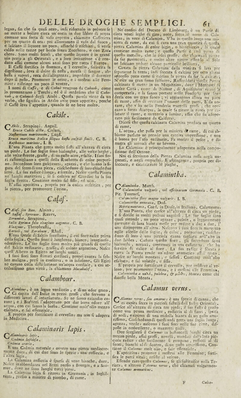 legno, fin che fia quafi nero, indi ridottolo in polverefe ne mette a bollire circa un’oncia in due libbre di acqua comune una forta di vafo coperto , chiamato Caffetiera per un quarto di ora; poi allontanato il vafo dal fuoco , e lafciato il liquore un poco, affinchè fi rifchiari, fi verfa caldo nelle tazze per berlo lenza Zucchero, o con Zuc* chero. Sono molti fecoli , che quello liquore è in grand’ ufo preio a gli Orientali , e a loro imitazione s’è ren- duto affai comune alcuni anni fono per tutta l’Europa. Il Caffè fortifica lo ftomaco, e ’l cervello, follecita la digeftione , leva il dolor di tefla , rarefa il fangue , ab¬ balla i vapori, reca deil’allegrezza, impedifce il dormire dopo il palio. Promuove le orine, e i mellrui alle Fem¬ mine; riflringe un poco il ventre. I nomi di Caffè, e di Cahue vengono da Cahueh, come Jo pronunziano i Turchi , ed è il medefìmo che il Cabo¬ tali , o Cahouch degli Arabi . Quella parola viene da un verbo, che fignifica in Arabo aver poco appetito, perche il Caffè leva l’appetito, quando fe ne beve molto. Calcile. Abile. Serapioni. Anguil. Eruca Cakìle ditta. Colum. Naflurtium marìtimum, Lugd. Eruca marìtima Italica filìqua hafl& cufpidi flmilì. C. B. Raphanus mar imi s. I. B. E’una Pianta che getta molti furti all’altezza di circa un piede. Le fue foglie fono bislunghe, alle volte larghe , alle volte frette, grafie , di un gufo acro, efalfo. Ifuoi fio¬ ri rallomigliano a quelli della Ruchetta di color porpori¬ no. Succedono loro gufcj corti, aguzzi, e che hanno la fi¬ gura del ferrodiuna picca, ciafcheduno di lorochiudedue lemi. La fua radice è lunga , e fiottile. Nafce quella Pianta ne' luoghi marittimi ; fe fi coltiva ne’ Giardini ha la fua foglia fretta. Contiene molto fai fido, ed olio. E’aliai aperitiva , propria per la colica nefritica , per¬ la pietra, per promovere l'orina. Galaf. Alaf. feu Ban. Alpino . Saffaf. Syrorum. Rauvv. Zerumbet. Serapioni. Salix Syriaca folto oleagineo aagenteo . C. B. El&agnus. Theophrafti. Zameb , vel Zarabum . Rhafi. E’una fpezle di Salcio forefliero, il cui fiore nafce prima della foglia. Quello fiore è lunghetto, bianco, lanuginofo, odorifero. Le lue foglie fono molto più grandi di quelle del Salcio ordinario, graffe, di colore argentino, Nafce quell’Albero in Egitto ne’luoghi umidi. I fuoi fiori fono (limati cardiaci, propri contra la feb¬ bre maligna, prefi in conferva, o in infufione. Gli Egizj ne cavano colla diftillazione un’acqua cordiale, a cui at- tribuifcono gran virtù , la chiamano Macabalef. Calambour. jC'Alambour, è un legno verdiccio , e di un odor grato. Ci capita dall’ Indi in pezzi grofì , che fervono a differenti lavori d’ intarlatura. Se ne fanno eziandio co¬ rone ; e i Barbieri l’adoperano per dar buon odore all’ acqua, con cui fanno la barba. Contiene mole* olio mezzo efaltato, e fai eflenziale. E’proprio per fortificare il cervello; ma non fi adopera in Medicina. Calamìnaris lapis. {p\Alammarìs lapis. Cadmia lapìdofa , j Cadmia ararla . j E una Cadmia naturale » ovvero una pietra mediocre- * mente dura, di cui due fono le fpezie ; una rofficcia, e ! I altra bigia , j Qalarnina rofficcia è fparfa di vene bianche, dure. : -Nafce mabbondanza nel Berri prefio a Bourges, e a Sau- mur, dove ne fono luoghi tutti pieni. La Calamuia bigia fi ritrova in Germania , in Inghil¬ terra, preiso a miniere di piombo, di rame. Ne’confini del Ducato di Limbourg, è un Paefe di circa venti leghe di giro, noto, fiotto il nome di Cil- mina, in vece diCalamina. V’ha in quello luogo una mi¬ niera di rame, da cui fi cava una gran quantità di quella pietra Calamina di color bigio , o bianchiccio , la quale' contiene molto rame; e queflo Paefe è cosi pieno di quello metallo, che le felci grolle, che chiamatili pietre da far pavimenti, e molte altre pietre e fieri do al Sole ne lalciano vedere alcune particelle brillanti. Cavata la pietra Calamina dalla miniera fi lava per fepararne la terra; indi feccata fi calcina per otto giorni a-p predo poco come fi calcina la pietra da far la cale r N’efce un gran fumo fulfureo. Raffreddata'-quella Pietra; calcinata fi mette in un Magazzino, dove i Mercanti di molte Città , come di Namur , di Aquifgrana vanno comperarla, e la fanno portare nelle Fonderle per fon¬ derla con un gran fuoco ; vi aggiungono allora un poco di rame, affin di eccitare l’unione delle parti. E’da no¬ tare, che v’ha nella Fonderia martelli grolfi , che ope¬ rano a forza di acqua, la quale fa girare la ruota per' di¬ latare il rame, e metterlo a lamine, alfin che fia adope¬ rato più facilmente da Calderai. Dicefi che quella calcinata Calamina produca un quarto di rame. L’acqua, che pafia per la miniera df rame, di cui ab¬ biamo parlato ne prende una cattiva imprelfione , e non è buona per l’ufo ordinario. Fa morire il pefee , e di¬ magra gli animali che ne bevono. La Calamina è principalmente adoperata nella compo- fizione dell’Ottone . Noi ci ferviamo della Pietra Calamina roda negli un¬ guenti, e negli empiali ri. E’ aftringeqte , propria per di- feccare, e cicatrizzare le piaghe * Calarnintha. Alamintba. Matth. Calarnintha vulgarìs , vel offfeìnarum Germania . C. B. Pit. Tournef. Calarnintha flore magno vulgarìs. J, B. Calarnintha montana. Dod. Nepetamontana. Cord. inDiofc.in Italiano, Calamento* E’una Pianta, che crefce all’altezza di circa un piede, e fi divide in molti polloni angolofi . Le fue foglie fono quafi rotonde , un poco aguzze , pelole , o leggiermente guarnite di lana bianca mede per ordine a due a due, 1’ una dirimpetto all’altra. Nafcono i luoi fiori in mazzetto nelle afcelle delle foglie, di color , porporino; ciafche¬ duno di loro è una picciola canna tagliata nell’alto in due labbra . Caduto quello fiore , gli fuccedono femi bislunghi, nericci, contenuti in una caflèttma, che ha lervito di calice al fiore . La fua radice è fibrata ; tutta la Pianta rende un’odore aromatico art i grato. Nafce ne’luoghi montani, e fa fio fi . Contiene molt’olio efaltato, e lai volatile, e fido. E’propria per fortificare il cervello, per refirtere al ve¬ leno , per promovere l’orina, e i melimi alle Femmina. Calarnintha a xaXrì, pttlchra, & fx.tvò’n , Menta ; come chi dicefle bella Menta. Calamus ve ras. f**Alamus vems, feu amarus ; è una fpezie di canna, che ci capita fecca in piccioli faftellidall’Indie Orientali. Crefce all’altezza di circa tre piedi; il fuo furto è grò Ho come una penna mediocre , rofficcia al di fuori , fparfa di nodi, eripiena di una midolla bianca di un gufto ama- riffimo. Ciafcheduno di quelli nodi getta una foglia lunga, aguzza, verde; nafcono i fuoi fiori nelle fue cime, dif- porte in ombrellette, o mazzetti gialli. Dee fceglierfi il Calamus in baftoncelli 'ungili circa un mezzo piede, adai grolfi, novelli, mandati dalia loro pic¬ ciola radice ; che facilmente fi rompano , rolficci al di fuori, bianchi aldi dentro, di un gurto amarilfimo. Con¬ tiene il Calamus molt olio, e fai e ertenziale. E’aperitivo; promove i mellrui alle Femmine; forti¬ fica le parti vitali; refirte al veleno. Edendo raro quello Calamus, fe gli fortituifee nella Te¬ riaca , e altrove V Acorus vems , che chiamafi volgarmen¬ te Calamus aromaticus. F Calca