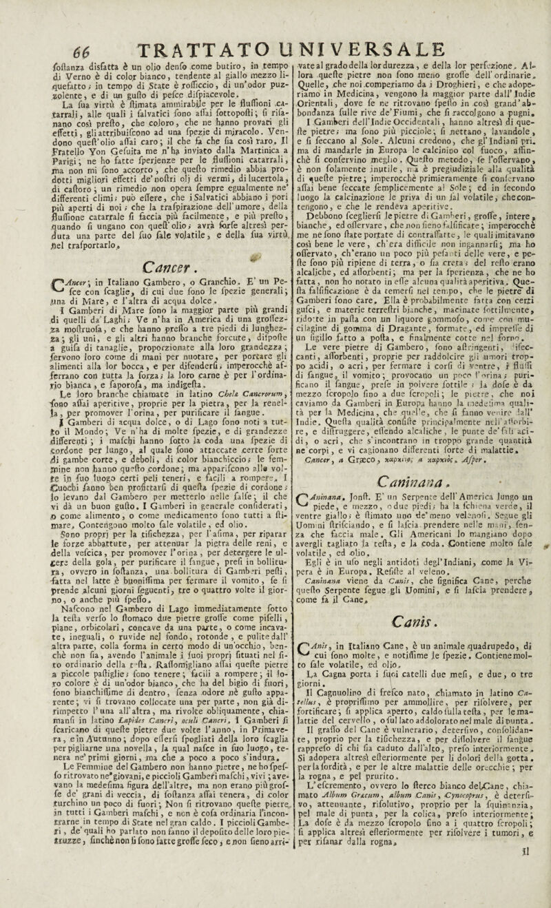 foftanza disfatta è un olio denfo come butiro, in tempo di Verno è di color bianco, tendente al giallo mezzo li¬ quefatto ; in tempo di State è ,rodicelo, di un’odor puz¬ zolente, e di un gulìo di pefee difpiacevole. La fua virtù è dimata ammirabile per le fluffioni ca¬ tarrali , alle quali i falvatici fono affai fottopodi ; fi rifa- nano così predo, che coloro, che ne hanno provati gli effetti, gliattribuifeono ad una fpezie di miracolo. Ven¬ dono quell’olio a Hai caro; il che fa che fia così raro. Il fratello Yon Gefuita me n’ha inviato dalla Martinica a Parigi; ne ho fatte fperienze per le .flulfioni catarrali, jna non mi fono accorto , che quello rimedio abbia pro¬ dotti migliori effetti de’nodri olj di vermi, di lucertola, di cadoro ; un rimedio non opera fempre egualmente ne’ differenti climi; può edere, che iSalvatici abbiano i pori più aperti di noi; che la trafpirazione dell’umore, della Buffone catarrale fi faccia più facilmente, e più predo, uando fi ungano con quell'olio; avrà forfè altresì perd¬ uta una parte del fuo fiale volatile, e della fua virtù, fiel trasportarlo « Cancer. Anter\ in Italiano Gambero, o Granchio. E’ un Pe¬ fee con fcaglie, di cui due fono le fpezie generali; l-ina di Mare, e l’altra di acqua dolce. I Gamberi di Mare fono la maggior parte più grandi di quelli da’Laghi; Ve n’ha in America di una grettez¬ za modruofà, e che hanno predo a tre piedi di lunghez¬ za; gli uni, e gli altri hanno branche forcute, dilpode a guifa di tanaglie, proporzionate alla loro grandezza ; fervono loro come di mani per nuotare, per portare gli alimenti alla lor bocca, e per djfenderfi, imperocché af¬ ferrano con tutta la forza; la loro carne è per l’ordina¬ rio bianca , e faporofa, ma indigeda. Le loro branche chiamate in latino CheU Cancrorum, Tono affai aperitive, proprie per la pietra, per la renel¬ la, per promover l’orina, per purificare il fangue. | Gamberi di acqua dolce, o di Lago fono noti a tut¬ to il Mondo; Ve n’ha di molte fpezie, e di grandezze differenti ; i maSchi hanno fatto ja coda una fpezie di cordone per lungo, al quale fono attaccate certe forte di gambe corte, e deboli, di color bianchiccio; le fem- ipine non hanno quedo cordone; ma appariscono alle vol¬ te fri fuo luogo certi peli teneri, e facili a rompere. I ■Cuochi faqno ben profittarfi di qtìeda fpezie di cordone; lo levano dal Gambero per metterlo nelle falfe; il che vi dà un buon gudo. I Gamberi in generale confiderati, ,0 come alimento, o come medicamento fono tutti a di- mare. Contengono molto fale volatile, ed olio. Sono propri per la tifichezza, per l’afima, per riparar le forze abbattute, per attenuar la pietra delle reni, e della vefcica, per promover l’orina , per detergere le ul¬ cere della gola, per purificare il fangue, prefi in bollitu- ra, ovvero in foflanza, una.bollitura di Gamberi pedi, •fatta nel latte è buoniffima per fermare il vomito, fe fi prende alcuni giorni Seguenti, tre o quattro volte il gior¬ no, o anche più fpeffo. Nafcono nel Gambero di Lago immediatamente fotto la teda verfo lo domaco due pietre grolle come pifelli, piane, orbicolari, concave da una parte, o come incava¬ te, ineguali, o ruvide nel fondo, rotonde , e pulite dall’ altra parte, colla forma in certo modo di un’occhio, ben¬ ché non fia, avendo l’animale ì Suoi propri fituati nel fi- to ordinario della t3da. Radomigliano affai quede pietre a piccole padiglie; fono tenere; facili a rompere; il lo¬ ro colore è di un’odor bianco, che ha del bigio di fuori, fono bianchiffime di dentro, Senza odore nè gudo appa¬ rente ; vi fi trovano collocate una per parte, non già di¬ rimpetto 1’una all’altra, ma rivolte obliquamente, chia- manfi in latino Lapiies Cancri, oculi Cancri, I Gamberi fi {caricano di quede pietre due volte l’anno, in Primave¬ ra, e in Autunno ; dopo efferfi fpogliati .-della loro Scaglia per pigliarne una novella, la qual nafee in fuo luogo, te¬ nera ne’primi giorni, ma che a poco a poco s’indura. Le Femmine del Gambero non hanno pietre, ne ho fpef¬ fo ritrovato ne*giova.ni, e piccioli Gamberi mafehi, vivi ; ave» vano la medefima figura dell’altre, ma non erano piùgrof- fe de’ grani di veccia, di fodanza affai tenera, di color turchino un poco di fuori; Non fi ritrovano quede pietre in tutti i Gamberi mafehi, e non è cofa ordinaria rincon¬ trarne^ tempo di State nel gran caldo. I piccioli Gambe- ri, de’quali ho parlato non fanno il depofito delle loro pie¬ nezze, finchènon li fono fatte grolle feco* e non fieno arri- vate al grado della lor durezza, e della lor perfezione. AL lora quede pietre non fono meno grotte dell’ordinarie. Quelle, che noi competiamo da i Droghieri, e cheadope«= riamo in Medicina, vengono la maggior parte dall’Indie Orientali, dove fe ne ritrovano fpefio in così grand’ab¬ bondanza fulle rive de’Fiumi, che fi raccolgono a pugni, I Gamberi dell’Indie Occidentali, hanno altresì di que¬ de pietre; ma fono più picciole; fi nettano, lavandole, e fi feccano al Sole. Alcuni credono, che gl’indiani pri. ma di mandarle in Europa le calcinino col fuoco, affin¬ chè fi confervino meglio. Quedo metodo, fe l’offervano, è non fidamente inutile, ma è pregiudiziale alla qualità di quede pietre; imperocché primieramente fi co.nfcrvano affai bene feccate femplicemente al Sole; ed in fecondo luogo la calcinazione le priva di un fai volatile, che con¬ tengono, e che le rendeva aperitive. Debbono fceglierfi le pietre di Gamberi, groffe, intere, bianche, edolfervare, che non fieno talfincate ; imperocché me ne fono date portate di contraffatte, le quali imitavano così bene le vere, ch’era difficile non ingannarfi.; ma ho offervato, ch’erano un poco più pefanti delle vere, e pe- de fono più ripiene di terra, o fia creta; del redo erano alcaliche, ed allorbenti ; ma per la fperienza, che ne ho fatta, non ho notato in efle alcuna qualitàaperitiva. Que- da falfificazione è da temerfi nel tempo, che le pietre di Gamberi fono care. Ella è probabilmente fatta con certi gufei, e materie terredri bianche, macinate fottilmente, ridotte in pada con un liquore gommofo, come con mu¬ ffi lagine di gomma di Dragante, formate, ed imprelfe di un Sigillo fatto a poda, e finalmente cotte nel forno. Le vere pietre di Gambero, fono ad ri rigenti, ifec- canti, adorbenti, proprie per raddolcire gii umori trop¬ po acidi, o acri, per fermare i corfi di ventre, i Buffi di fangue, il vomito; provocano un poco farina; puri¬ ficano il fangue, prefe in poivere fiottile ; Ja dofe è da mezzo fcropoio fino a due fero poi i ; le pietre, che noi caviamo da Gamberi in Europa hanno la medefima quali¬ tà per la Medicina, che quelle, che fi fanno venire !a!ì’ Indie. Queda qualità confile principalmente neli'forbi¬ re, e didruggere, efièndo alcaliche, le punte de* fa li aci¬ di, o acri, che s’incontrano in troppo grande quantità ne corpi, e vi cagionano differenti forte di malattie. Cancer, a Graeco , xupxhfig a jcapxvè?» Afper. Canhiana, ^Aninanat Jond. E 1,11 Serpente dell’America lungo un piede, e mezzo, odue piedi; ha la fchiena verde, il ventre giallo; è dimato uno de’meno velenofi. Segue gli Uormni drifeiando, e fi lafcia prendere nelle mani , len¬ za che faccia male. Gli Americani lo mangiano dopo avergli tagliato la teda, e la coda. Contiene molto fale volatile , ed olio. Egli è in ufo negli antidoti degl’indiani, come la Vi¬ pera è in Europa. Refide al veleno. Caninana viene da Canis, che fignifica Cane, perche quedo Serpente fegue gli Uomini, e fi lafcia prendere, come fa il Cane» Canis. r^Anis^ in Italiano Cane, è un animale quadrupedo, di ^ cui fono molte, e notiffime le fpezie. Gontienemol- to fale volatile, ed olio. La Cagna porta i fiioi catelli due .meli, e due, o tre giorni. II Cagnuolino di frefeo nato, chiamato in latino Ca- teìlus, è propriffimo per ammollire, per rifolvere, per fortificare; fi applica aperto, caldo fòlla teda, per le ma¬ lattie del cervello, o fui lato addoloratone! male di punta. Il graffo del Cane è vulnerario, deterfivo, confolidan- te, proprio per la tifichezza, e per didolvere il fangue rapprefo di chi fia caduto dall’alto, prefo interiormente. Si adopera altresì ederiormente per li dolori della gotta, perlafordità, e per le altre malattie delle orecchie; per la rogna, e pel prurito. L’eferemento, ovvero lo derco bianco defiCane, chia¬ mato Album Gr&cum, album Canis, Cynocoprus, è deterfi¬ vo, attenuante, rifolutivo, proprio per la fquimnzia, pel male di punta, per la colica., prefo interiormente; La dofe è da mezzo fcropoio fino a i quattro fcropoli ; fi applica altresì ederiormente per rifolvere i tumori, e per rifanar dalla rogna» II
