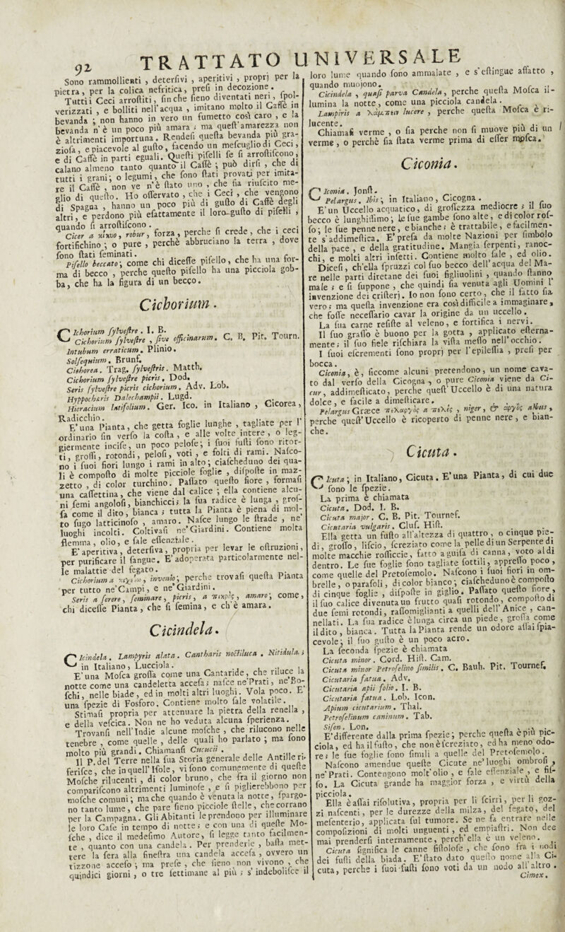 c,Z Sono rammollienti , deterfivi , aperitivi , propri per la pietra, per la colica nefritica, prefi in decozione. Tuttii Ceci arroftiti, finche fieno diventati neri, (pol¬ verizzati , e bolliti nell’acqua , imitano molto il Galle in bevanda ; non hanno in vero un fumetto cosi caro , e .a bevanda n è un poco più amara ; ma quell amarezza non è altrimenti importuna . Rendei! quella bevanda piu gra- ziofa, e piacevole al gufto, facendo un• mefcuglio di Ceci, e di Caffè in parti eguali. Quelli ■P'felU f® fid| calano almeno tanto quanto il Caffè , può dirli , che di tutti i grani-, o legumi, che fono flati provati per imita¬ le il Caffè /non ve nè flato uno , che ha riufcito me* gffo di quello. Ho offervato , che i Ceci che vengono di Spagna , hanno un poco piu di gufto di Caffè degli altri, e perdono più efattamente il loro-gufto di pifeMi , s :ZfrZ:; forza , perche.f, crede . che i ceci fortifichino ; o pure , perche abbruciano la tetra , dove *°npi/ello beccato ; come chi dicefle pifello, che ha una for¬ ma di becco , perche quello pifello ha una picciola gob¬ ba, che ha la figura di un becco. e s'eftingue affatto Cichorium. Clchorium fylveftre . I. B. Cichorium fylveftre , fa* officmarum, C. B. Pie. T, rn lntubum erratìcum. Plinio. Solfequium. Brunf. Chhorea. Trag. fylveftris. Matth. Cichorium fylveftre picris, Dod. Seris fylveftre picris cichorium. Adv. Lob. Hyppocburis Dalechampiì. Lugd. _ Hi crac ìu tn latifoltum. Ger. Ico. in Italiano, Cicorea , R E’una Pianta, che getta foglie lunghe , tagliate per 1 ordinario fin verfo la coita , e alle volte intere o> leg¬ giermente incife, un poco pelofe; 1 fuoi furti lo.no ti, graffi, rotondi, pelofi, voti , e folti di rami. Nalco- no i fuoi fiori lungo i rami in alto ;; ciafcheduno dei qua¬ li è compollo di molte pianole foghe , difpofte in maz¬ zetto , di color turchino. Paflato queffo fiore, formali una caffettina, che viene dal calice , ella contiene alcu¬ ni femi angolofi, bianchicci; la fua radice e lunga , gr - fa come il dito, bianca ; tutta la Pianta e piena di mol¬ to fugo latticinofo , amaro. Nafte lungo le llrade , ne luoghi incoici. Coltivafi ne Giardini. Contiene molta flemma, olio, e fate efienziale. E’ aperitiva, deterfiva, propria per levar te effrazioni, per purificare il fangue. E’adoperata particolarmente nel¬ le malattie del fegato. cichorium a w^é'ù), invento^ perche trovafi quella Pianta per tutto ne’Campi, e ne Giardini. ( Seri, a ferere , feminare , picris, a Tnxpop, amaro; come, chi dicefle Pianta, che fi femina, e co e amara. Cicindela. loro lume quando fono ammalate quando muojono. c Cicindela , quafì parva Candela, perche quella Molca il¬ lumina la notte, come una picciola candela. x Lampìris a \ùfu.7iuv lucere , perche quella Moka e ri¬ lucente. „ , , •' j- . Chiamai verme , o fia perche non fi muove piu di un verme, o perchè fia Hata verme prima di eller ippica. Ciconia. C1 leoni a. Jonft. . „ 1 Felargus. ibis ; in Italiano, Cicogna . E’un Uccello acquatico, di groffezza mediocre ; il tuo becco è lunghi (fimo -, le fue gambe fono alte, edtcolorrol- fo; le fue penne nere, e bianche; e trattabile, eiacilmen- te s’addimeftica. E’prefa da molte Nazioni per fimbolo della pace , e della gratitudine. Mangia ferpenti, ranoc¬ chi, e molti altri infetti. Contiene molto fale , ed olio. Dicefi, ch’ella Ipruzzi col fuo becco dell acquadel Ma¬ re nelle parti diretane dei fuoi fighuolini , quando hanno male ; e fi fuppone , che quindi fia venuta agli Uomini L iavenzione dei crifterj. Io non fono certo, che il latto lia, v^ro; ma quella invenzione era cosi difficile a immaginare, che folle neceffario cavar la origine da un uccello. La fua carne refille al veleno, e fortifica 1 nervi. Il fuo graffo è buono per la gotta , applicato elterna- mente; il fuo fiele rifehiara la villa merlo nell occhio. I fuoi eferementi fono propri per 1 epileflia , pich per bocca. , Ciconia, è, ficcome alcuni pretendono, un nome cava¬ to dal verfo della Cicogna , o pure Ciconia viene da C;- cur, addimellicato, perche quell’Uccello e di una natuia dolce, e facile a dimefticare. . . , „ u Felargus Grasce UtXapyk a TJi\(S , ntger, Z? apyos aìéus , perche quell’uccello è ricoperto di penne nere, e bian¬ che. p jdndela . Lampyrìs alata . Canrbaris nottiluca . Ndidu!a. ; ^ in Italiano, Lucciola. , E’una Mofca grolla come una Cantaride, che riluce la notte come una candeletta accefa; nalce ne Prati, n ^ fchi, nelle biade, ed in molti altri luoghi Vola poco. E una fpezie di Fosforo, Contiene molto fale volatile Stimafi propria per attenuare la pietra della renella e della vefcica. Non ne ho veduta alcuna fperienza. Trovanfi nell’Indie alcune molche, che rilucono nelle tenebre , come quelle , delle quali ho parlato ; ma lono molto più grandi. Chiamanfi Cttcucii • Il P del Terre nella fua Storia generale delle Antilleri» ferifee’ che in quell’ Ifole, vi fono comunemente di quelt Molche rilucenti , di color bruno, che fra il giorno non comparifeono altrimenti luminofe , e fi pighereobono p.r mofche comuni; ma che quando è venutala notte, ipaigo no tanto lume, che pare fieno pianole delle, checorran per la Campagna. Gli Abitanti le prendono per illuminare le loro Cafe in tempo di notte; e con una di quelle Mo- fche , dice il medefimo Autore, fi legge tanto facilmen¬ te , quanto con una candela . Per prenderle , balta met¬ tere la fera alla fineflra una candela accefa , ovveio un tizzone accefo ; ma prefe , che fieno non vivono , che quindici giorni , o tre fettimane al piu ; s indeboulce il Cicuta. i r* lenta ; in Italiano, Cicuta. E’una Pianta, di cui due fono le fpeziè. La prima è chiamata Cicuta. Dod. I. B. cicuta major. C. B. Pit. Tournef. Cicutaria vulgaris. Ciuf. Hift. Ella eetta un fufto all’altezza di quattro , o cinque pie¬ di, graffo, lifeio, fcreziato come la pelle di un Serpente di molte macchie rofficcie, fatto aguifa di canna, voto aldi dentro. Le fue foglie fono tagliate Lottili, appretto poco, come quelle del Pretofemolo. Nafcono i tuoi fiori in om¬ brelle, oparafoli, di color bianco ; ciafcheduno e rampollo di cinque foglie , difpofte in giglio . Paflato queffo fiore , il fuo calice divenuta un frutto quafi rotondo, compu i due femi rotondi, raffomiglianti a quelli dell Anice , can¬ nellati. La fua radice è lunga circa un piede , grolla come Udito, bianca. Tutta la Pianta rende un odore affai pia¬ cevole; il fuo gufto è un poco acro. La feconda ipezie è chiamata Cicuta minor. Cord. Hift. Cam. r Cicuta minor Petrofelìno fìmilis. C. Bauh. Pit. Tournef, Cicutaria fatua. Adv. Cicutaria apii folio. I. B. Cicutaria fatua. Lob. Icon. Apìum cicutarium. Thal. Petrofelinum caninum. Tab. Sì fon. Lon. « \ * E’differente dalla prima fpezie; perche quella epiu pic- ciola, ed ha il fufto, che non è fcreziato, ed ha meno odo¬ re; le fue foglie fono Umili a quelle del Pretoiemolo. Nafcono amendue quelle Cicute ne’luoghi ombrali , ne’Prati. Contengono molt’olio , e fale efienziale , e m- fo. La Cicuta grande ha maggior forza , e virtù della Ella è affai rifolutiva, propria per li lcirn , pei li goz¬ zi nafeenti, per le durezze della milza, del fegato, del mefenterio, applicata fui tumore. Se ne fa entrare nelle compofizioni di molti unguenti, ed empiaffn. Non dee mai prenderfi internamente, perch eha e un veleno. Cicuta lignifica le canne fiilolole , che fono tra ì nodi dei fulli della biada. E’flato dato quello nome alia Ci¬ cuta, perche i fuoi-Mi fono voti da un nodo aU altro . 1 1 Ctmex.