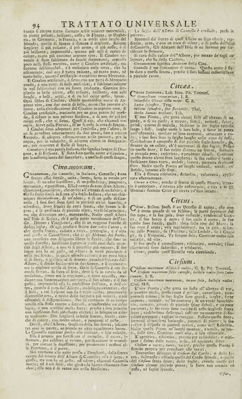 9+ turale fi ritrova tutto formato nelle miniere mercuriali, in pietre pefanti, brillanti, rolTe, in Ifpagna, in Unghe¬ ria, in Germania, in Francia, e in molti altri luoghi del Mondo; quello di Spagna è (limato il migliore. Bifogna fcegliere il più pefante, il più netto, il più rodo, e il più brillante ; imperocché, quanto più egli è carico di colore, tanto più contiene argento vivo. Il Cinabro na¬ turale è fiato fublimato da fuochi fotterranei, apprefio poco nella ftefla maniera, come il Cinabro artifiziale, ma ficcome lùblimandofi, s’è mefcolato colia terra, che ha rifcontrato; cosi non è tanto pefante, nè tanto puro, nè tanto bello, quanto l’artifiziale ; e contiene meno Mercurio. Il Cinabro artifiziale, è fatto con tre parti di Mercurio crudo, e una parte di lolfo mefcolati, e fublimatiinfieme in vafi fublimatori con un fuoco graduato. Convien fce- glierlo in belle pietre, affai pefanti, brillanti, con aghi funghi, e belli, netti, e di un bel color rofio , bruno. Ogni libbra di Cinabro, chiude quattordici onde di Ar¬ gento vivo, con due onde difolfo, come l’ho provato al¬ trove, colla rivivificazione del Cinabro in argento vivo. Il Cinabro artifiziale, (nacinato per un gran pezzo fui porfi¬ do, fi riduce in una polvere finiffima, e di uno de’più bei colori refi!, che vi fieno. Quell’ è ciò, che chiamafi ver. mìglio. Serve nella Pittura , fe ne fa rofia la cera di Spagna. I Cinabri fono adoperati per l’epilefiia, per l’afima ; fe ne fa prendere internamente da due grani, fino a mezzo fcropolo. Si adopera efternamente nelle pomate, per la rogna, per le volatiche. Si adopera altresì in fumigazio¬ ne, per muovere il flufio di bocca Cinnabarìs è una parola Indiana, che fignifica (angue di Dra¬ gone, e di Elefante. E’ fiato dato quefio nome al Cinabro , per la radomiglianza del fuo colore, a quello di quefti fangui » Cìnnamùmum. 4O Innamotnutn, feu Cannella', in Italiano, Cannella; èuna i'-s* feorza afiai lottile, unita, lunga, fatta in rotolo per lungo , di un odor foavilfimo , di un gufio dolce, pungente, 5 aromatico, e gratifiimo. Ella è cavata da rami di un Albero , chiamato Cannelliero , che crefce all’altezza di un Salcio , e fche ha foglie fimi li iti figura alla foglia Indiana, che noi chia¬ miamo Malabathrum, di un’odore, e di un gufio di Can¬ nella. 1 fuoi fiori fono fatti in piccioli calici bianchi, e odoriferi. Sono feguiti da certi frutti, che hanno la fi¬ gura , eia grofiezza di picciole ulive, verdi fui principio, ma che diventano neri, maturando. Nafce quefi Albero nell’lfok di Zfilan, ch’è nella parte meridionale dell’in¬ die . Dicono 1 Viaggiatori, che fe ne veggono Forefte di dodici leghei ch’egli produce frutto due volte l’anno , e che quello frutto, caduto a terra, germoglia, e s’alza cosi prefio in Cannelliero, che fe gli Abitanti dei Paefe, non teneffero con diligenza libere le firade, che fono in quelle Forefie , farebbono ferrate in pochi anni dalia quan¬ tità degli Alberi, e non vi fi potrebbe più entrare. Il fuo legno non ha nè gufio, nè odore> la virtù principale è nella tua feorza, la quale elTendo recente è un poco bigia al di fuori, e giallicia al di dentro; quando è fe parata dall’ Albero, fi divide facilmente in duefeorze, e fi ritiene co¬ me la migliore quella di fotto. Onde la Cannella è una fe¬ conda feorza. Si fecca a! Sole, dove fi fa in rotolo da. sè medefima, come noi la vegliamo, e dove acquifia, me¬ diante una fermentazione interiore, il fuo odore, e il fuo gufio; imperocché ella ha pochiflìmo dell’uno, e dell’al¬ tro, quando fi cava dall’Albero , ma bifogna avvertire , che il Sole, a cui fiefpone non fia troppo caldo; imperocché diverrebbe nera, e molte delle fue parti più volatili, e più eflenziali fi difiiperebbono. Perdo contrario fe in tempo umido ella fiefie troppo a feccarfi, acquifierebbe un color bigio, e non avrebbe molta forza: perche i Tuoi principi non farebbono fiati abbaffanza efaltatr, le bifogna un calo¬ re moderato- Dee fceglierfi in beile feorze, fottili, cari¬ che di colore, con molto odore, e pungenti al gufio. Dicefi, che l'Albero, fpogliato della Tua feorza, lafciato tre anni in quiete, ne prende un altra egualmente buona. La Cannella contiene molto olio efaltato, e Cade volatile. ( Ella è propria per fortificare il cervello, il cuore, lo La foglia dell’Albero di Cannella è cordiale, prefa in polvere. Spremefi dal frutto di quefi’Albero un fugo oleofo, ver¬ diccio, acro, e con un poco di odore, e di gufio dell’olio di Cannella. Gli Abitanti dell’ Ifola fe ne fervono per for¬ tificare lo fiomaco. Si cava dalla radice dell’Albero, per mezzo de’tagli un liquore, che ha della Canfora. Cinnamomnm lignifica Amòmum della Cina. Cannella è un diminutivo di canna. Quefio nome è fia¬ to dato a quella feorza, perche i fuoi baffoni raflòmigliano a picciole canne. C ir erta. f^lrcta Lutetìana. Lob. Icon. Pit. Tournef. ' Oriniaftrum verrjaarium , I. B. Solanifolia Circ&a dieta major. C. B. Lappa fylveftrìs. Trag. Helxine fylveftrìs , five fluviatilis. Thal. Herba Domini Stephanì. Tab. E’ una Pianta, che getta alcuni fufii all'altezza di un piede, o di un piede, e mezzo, fottili, rotondi, dritti, pelofi, ripieni di midolla. Nafceno le fue foglie oppofie lungo i furti, larghe verfo la loro bafe, e fatte in punta nell’efiremità, merlate ne'loro contorni, attaccate a co¬ de ; i (noi fiori fono in fpighe lunghe nelle cime de’ fufii. Ciafcheduno è cpmpofto di due picciole foglie bianche, lo. fienute da un calice, ch’è parimenti di due foglie. Parta- to quello fiore, il fuo calice diventa un frutto, formato in pioemia pera, arricciato, e pendente abballo. Contiene quefio frutto alcunifemi lunghetti; la fua radice è lunga, firifeiante fotto terra, nodofa, bianra, guernita di alcune fibre. Nafce quella Pianta ne’luoghi ombrofi, umidi, ne' Bofcbi, intorno alle fiepi. Ella è filmata rifolutiva, ieterfiva , vulneraria, appli¬ cata efternamente. Circa a a Circe', perche il frutto di quella Pianra, il qua¬ le è arricciato, s'attacca alle veftimenta, e tira a sè gli Uomini; ficcome Circe gli tirava co’fuoi incanti. Circus. C^lrcus. Bellon. Jonft. è un Uccello di rapina, che non ^ è meno grande di un Nibbio; la parte fuperiore del fuo capo, e la fua gola, fono rolticcie, tendenti al bian¬ co, il fuo becco è nero; il fuo collo è corto, le fue gambe fono fottili, gialle: Culle rive del Mare; la fua voce è acuta; vola rapidamente, ma in giro. Si lan¬ cia fu!le Pernici, fu iPiccioni-, TulleLodole, fu i Coni¬ gli, fu i Volpicini. Va Tempre folo. Contiene molto (ale volatile, ed olio. Il fuo graffo è ammolliente, rifolutivo, nervale; i fuoi eferementi fono fudorifici, e rifolutivi. Circus; perche quell’uccello vola circolando, C ir fiuta. {f'''lrfinm maximum Afphodeli radice, C. B. Pit. Tournef, '-J Cirfiitm maximum folìis carnofts, bulbo fa radice forte Lute- tianum . I. B. Cirfium maximum montanum, ine ano folio , bnlbofa radice Ciuf. Hift. E’una Pianta , che getta un furto all’ altezza di tre, 0 quattro piedi, grolla come il pollice, cannellato, rico- pertodi cotone; le lue foglie fono grandi, larghe, fatte in punta, merlate, ne’ lor contorni ; di un verde bianchic¬ cio, carnute, armate di picciole fpine deboli, e un poco pungenti, I? fuecime fono carichedi tefte lcaglìofe fenza (pine; ciafcheduna delle quali lofiiene un mazzetto di fio¬ rellini porporini, tagliati in coreggie . Fallato quello fiore, formanfi alcuni Temi bislunghi, guerniti di piume; la fua radice è difpofta in piccioli navoni, come nell’Asfodelo. Nafce quefia Pianta ne’luoghi montani, e umidi, ne’pra- ti, Tulle rive. Contiene mole’olio, e Tale efi'enziale. - - - . , . E’aperitiva, rifolutiva, propria per raddolcire, e miti- itomaco, per refifiere al veleno, per ifcacciare le ventoft- 'gare i dolori delle varici, polla, ed applicata l'opra . là, per aiutare la digefiione, per promovere i meftrui al- Cirfium a *(p 70;, varix, vai ice, perche quefia Pianta è le Femmine, e il parto. 'filmata propria per rimediare alle varici. Noi troviamo alle volte prerto a’Droghieri, della feorza Tournefort diftingue il Cirfium dal Cardo, e dalla Ja- cavata dal ttonco dell Albero diCmnella; ella è larga, e cea, dalletefie; efiendo quelle del Cardo fpinofe, equelle groi.a, ma non ha ne gufio, nè odore; chiamali Cannella idei Cirfium fenza fpine; dalle foglie, avendo quelle del matta; ed e ciò lorle, che gli «A rubi hanno chiamato Dar- . Cirfium alcune picciole punte; la Jacea non avendo nè chem ; ella non e di verun ufo nella Medicina. : teda, nè foglie fpinofe. ^ Cfius,