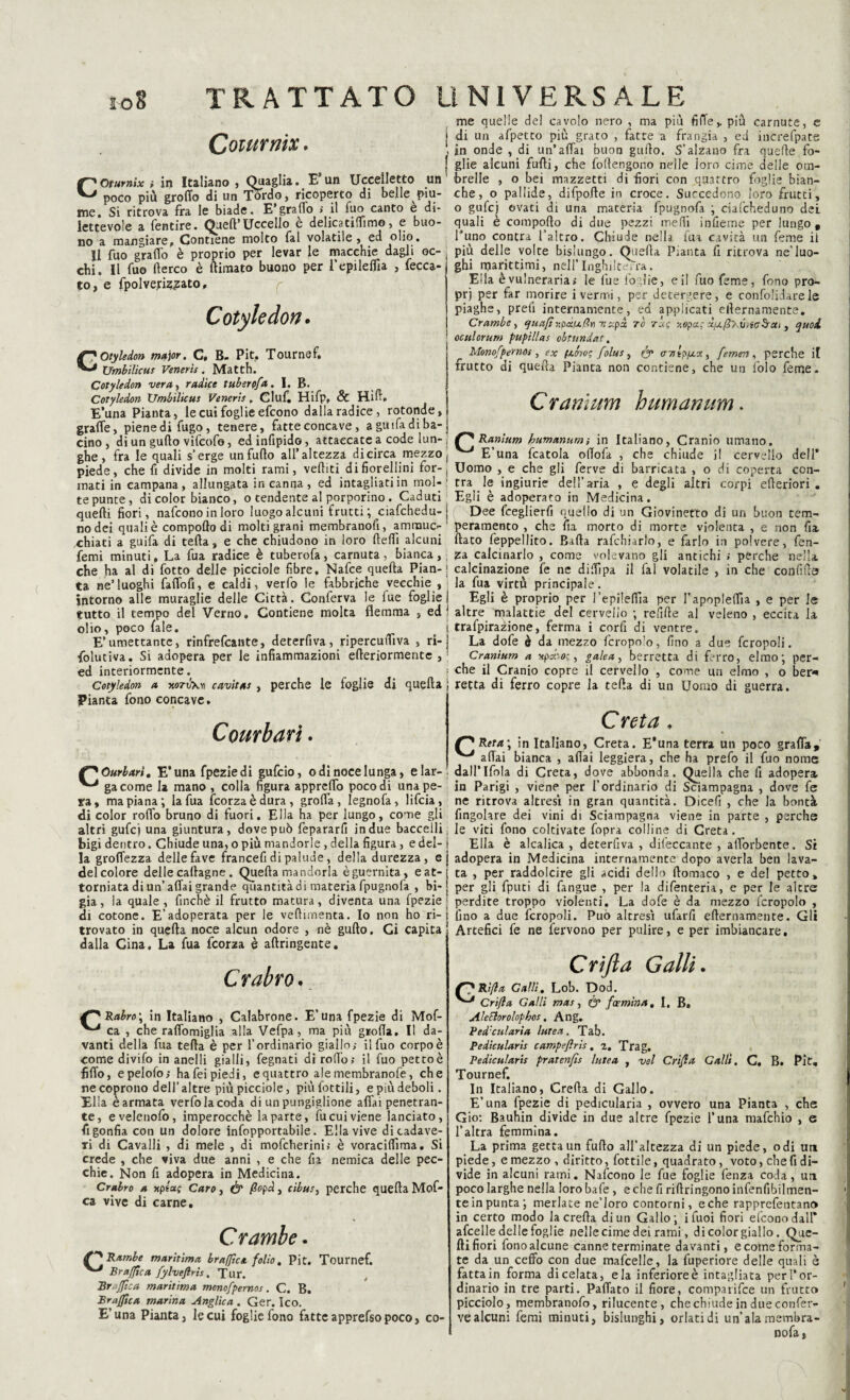 Coutr nix. COtumix i in Italiano , Quaglia. E un Uccelletto un poco più grofib di un Tordo, ricoperto di belle piu¬ me. Si ritrova fra le biade. E*grado ; il fuo canto e di¬ lettevole a fentire. Quell’Uccello è delicati (fi mo, e buo¬ no a mangiare, Contiene molto fai volatile, ed olio. Il fuo grado è proprio per levar le macchie dagli oc¬ chi. Il fuo (lerco è (limato buono per l’epilelfja , fecca- to, e fpolveriz^ato. Cotyledon. c 7 Otyledon major. C, B. Pit. Tournef. Vmbilicus Venerìs. Matth. Cotyledon vera, radice tubsrofa. I. B. Cotyledon Vmbilicus Veneris, Ciuf. Hifp, & Hirt. E’una Pianta, le cui foglie efcono dalla radice, rotonde, graffe, pienedifugo, tenere, fatteconcave, a i fa di ba¬ cino , di un gullo vifcofo, edinfipido, attaccate a code lun¬ ghe, fra le quali s’erge un furto all’altezza di circa mezzo piede, che fi divide in molti rami, vediti di fiorellini for¬ mati in campana, allungata incanna, ed intagliati in mol¬ te punte, di color bianco, o tendente al porporino . Caduti quelli fiori, nafcono in loro luogo alcuni frutti ; ciafchedu- no dei quali è comporto di molti grani membratiofi, ammuc¬ chiati a guifa di teda, e che chiudono in loro fierti alcuni femi minuti, La fua radice è tuberofa, carnuta, bianca, che ha al di fotto delle picciole fibre, Nafce quella Pian¬ ta ne’luoghi faffofi, e caldi, verfo le fabbriche vecchie , intorno alle muraglie delle Città. Conferva le fue foglie tutto il tempo del Verno, Contiene molta flemma , ed olio, poco fale. E’umettante, rinfrefcante, deterfiva, ripercuflìva , ri¬ solutiva. Si adopera per le infiammazioni efteriormente , ed interiormente. Cotyledon a xoroxn cavitas, perche le foglie di quella Pianta fono concave. Courhari. f^Ourbari. E’una fpeziedi gufcio, odi noce lunga, elar- gacome la mano , colla figura appretto poco di una pe¬ ra , ma piana ; la fua fcorza è dura , grotta , legnofa , lifcia, di color rotto bruno di fuori. Ella ha per lungo, come gli altri gufci una giuntura, dove può fepararfi in due baccelli bigi dentro. Chiude una, o più mandorle, della figura, e del¬ la groffezza delle fave francefi di palude, della durezza , e del colore delle cartagne. Quella mandorla èguernita, eat- torniata di un’affai grande quantità di materia fpugnofa , bi¬ gia, la quale, finché il frutto matura, diventa una Spezie di cotone. E’adoperata per le vertimenta. Io non ho ri¬ trovato in quella noce alcun odore , nè gullo. Ci capita dalla Cina. La fua fcorza è aftringente. Crubro. Rubro ; in Italiano , Calabrone. E’una Spezie di Mof- ca , che raffomiglia alla Vefpa, ma più grotta. Il da¬ vanti della fua teda è per l’ordinario giallo,- il fuo corpo è come divifo in anelli gialli, fegnati di rotto; il fuo pettoè fitto, epelofo; hafeipiedi, equattro alemembranofe, che re coprono dell’altre più picciole, più lottili, e più deboli. Ella è armata verfo la coda di un pungiglione affai penetran¬ te, evelenofo, imperocché la parte, fu cui viene lanciato, fi gonfia con un dolore infopportabile. Ella vive di cadave¬ ri di Cavalli , di mele , di mofcherini; è voracittìma. Si crede , che viva due anni , e che fi a nemica delle pec¬ chie. Non fi adopera in Medicina. Crabro a *p/ac Caro, & fiopà, cibus, perche quella Mof- ca vive di carne. Crambe. ^ Rumbe maritima brafficu folio. Pit. Tournef. ^ Braffica fylveftris. Tur. Braffica maritima monofpernos. C. B. Br affile a marina Anglica . Ger. Ico. E’una Pianta, le cui foglie fono fatte apprefso poco, co¬ me quelle del cavolo nero , ma più fitte> più carnute, e di un afpetto più grato , fatte a frangia , ed increfpate in onde , di un’affai buon gurto. S’alzano fra quelle fo¬ glie alcuni furti, che fofiengono nelle loro cime delle om¬ brelle , o bei mazzetti di fiori con quattro foglie bian¬ che, o pallide, difporte in croce. Succedono loro frutti, o gufej ovati di una materia fpugnofa ; ciafcheduno dei quali è comporto di due pezzi metti inficine per lungo, Tuno contra l’altro. Chiude nella fua cavità un feme il più delle volte bislungo. Quella Pianta fi ritrova ne’luo¬ ghi marittimi, nell'Inghilterra. Erta è vulneraria; le fue foglie, e il fuo feme, fono pro- prj per far morire i vermi, per detergere, e confolidarele piaghe, prefi internamente, ed applicati ellernamente. Crambe, quafinodu/ln 7izpx rò tu; uopoi; ù/xfiy.vvta^ai, quoi oculorum pupillas obtundat. Monofpernos , ex (scovo1; folus, & crntzia.?., femen , perche il frutto di quella Pianta non contiene, che un lolo feme. Crantum humanum. Ranium humanum} in Italiano, Cranio umano. ^ E’una fcatola ottofa , che chiude i! cervello dell’ Uomo , e che gli ferve di barricata , o di coperta con- tra^ le ingiurie dell’aria , e degli altri corpi ellebori . Egli è adoperato in Medicina. Dee feeglierfi quello di un Giovinetto di un buon tem¬ peramento , che ila morto di morte violenta , e non fia, (lato feppellito. Batta raffinarlo, e farlo in polvere, fen- Za calcinarlo , come volevano gli antichi ; perche nella calcinazione fe ne diffipa il fai volatile , in che confitta la fua virtù principale. Egli è proprio per I ’epileffia per fapoplettia , e per le altre malattie del cervello ; refitte al veleno , eccita la trafpirazione, ferma i corfi di ventre. La dofe è da mezzo fcropo’o, fino a due fcropoli. Cranium a xpaóos, galea, berretta di ferro, elmo; per¬ che il Cranio copre il cervello , come un elmo , o ber* retta di ferro copre la teda di un Uomo di guerra. Creta . £*Reta\ in Italiano, Creta. E’una terra un poco graffa, ^ affai bianca , aliai leggiera, che ha prefo il fuo nome dall’Ifola di Creta, dove abbonda. Quella che fi adopera in Parigi , viene per l’ordinario di Sciampagna , dove fe ne ritrova altresì in gran quantità. Dicert , che la bontà Angolare dei vini di Sciampagna viene in parte , perche le viti fono coltivate fopra colline di Creta. Ella è alcalica , deterfiva , difeccante , afforbente. Si adopera in Medicina internamente dopo averla ben lava¬ ta , per raddolcire gli acidi dello ftomaco , e del petto, per gli fputi di fangue , per la difenteria, e per le altre perdite troppo violenti. La dofe è da mezzo fcropolo , fino a due fcropoli. Può altresì ufarfi ellernamente. Gli Artefici fe ne fervono per pulire, e per imbiancare. Grifi a Galli. f^Rìfla Galli. Lob. Dod. ^ Crifla Galli mas, & feemina, I. B. AleElorolophos. Ang. Ped:cui aria lutea. Tab. Pedicularis campeflris. z. Trag. Pedicularis pratenfìs lutea , vel Crifla Calli. C. B. Pit. Tournef. In Italiano, Creila di Gallo. E’una fpezie di pedicularia , ovvero una Pianta , che Gio: Bauhin divide in due altre fpezie l’una mafehio , e l’altra femmina. La prima getta un furto all’altezza di un piede, odi uti piede, e mezzo, diritto, Lottile, quadrato, voto, che fi di¬ vide in alcuni rami. Nafcono le fue foglie fenza coda, un poco larghe nella lorobafe, e che fi rirtringonoinfenfibilmen- te in punta; merlate ne’loro contorni, e che rapprefentan» in certo modo la creila di un Gallo; i Tuoi fiori efcono dall* afcelle delle foglie nelle cime dei rami, di color giallo. Que¬ lli fiori fono alcune canne terminate davanti, e come forma¬ te da un ceffo con due mafcelle, la fuperiore delle quali è fatta in forma di celata, eia inferiore è intagliata per l’or¬ dinario in tre parti. Paffato il fiore, comparifce un frutto picciolo, membranofo, rilucente, che chiude in due confer¬ ve alcuni femi minuti, bislunghi, orlati di un’ala membra- nofa,