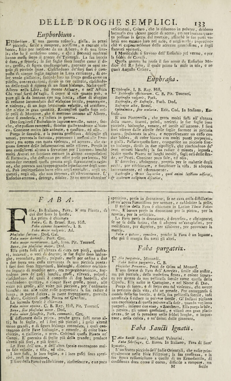 Euphorbium. TJUphorbìum , E’ una gomma refinofa, gialla, in pezzi piccioli, facile a rompere, acrifììma , o cocente alla bocca. Efce per ineifione eia un Albero, o da una feru¬ la, che ha i! medefimo nome, e*, cjie i Botanici moderni hanno mefla fotto il genere de’Titimagli. La fua buccia è dura,« fpinofa; le fue foglie fona lunghe come il di¬ to, grafìe, di figura quadrangolare, guarnite in ogni an¬ golo di picciole (pine. Ciafcheduno de’fuoi fiori è com- pofto'di cinque foglie tagliate in Luna crescente, di co¬ lor verde gialliccio; face ed e loro un frutto groflocome un pifello, con tre cantoni* d.iviì'o in tre cellette, ciafchedu- na delle quali è ripiena di un feme bislungo. Nafce quell’ Albero nella Libia, fui monte Atlante, e nell’Affrica Chi vuol farvi de’tagli, fi copre i! vifo quanto può, o pure gli fa da lontano con una lancia, affine di sfuggire di reftarne incomodato dall’efalazion lottile, penetrante, e violenta, di un fugo latticinpfo volatile, ed acriifimo, che n’efce in gran quantità. Raccogliefi quello fugo nel¬ le pelli di Montone, che fi mettono intorno all'Albero, dove fi condenla , c s’indura in gomma. Dee fceglierfi 1‘Euforbio in lagrime novelle, nette, fec- che, che poffano romperli, di color giallo tendente al bian¬ co. Contiene molto fale ardente, e cauftico, ed olio. Purga le fierofità, e la pituita'grofìolana , difcioglje gli umori, provocalo fìarnuto, promuove i raeftrui alle Fem¬ mine; ma opera con tanta violenza, ed acrezza, che ca¬ giona fovente delle infiammazioni nelle vifeere. Perciò io non configlierei alcuno a fervicene per l’interno; benché molti Autori ne facciano entrare in alcune compofizioni di Farmacia, che defìinaao per efiér prefe per bocca. Nè meno dee metterfi quella gomma negli (brnutatorj a cagio¬ ne, che provoca una troppo grande liquefazione degli umo¬ ri. Può impiegarfi con buon efito negli ernpiafiri, negli un¬ guenti, negli olj, che non fervono, ch’efteriormente. L’ Euforbio attenua, deterge, rifolve. Sene mette altresì ne’ vefcicatori. Coloro , che lo riducono in polvere, debbono bagnarlo con alcune goccie di aceto, e tener lontana quan¬ to pofìono la faccia dal mortajo, affinchè le lue parti vo¬ latili non entrino loro nel nafo, e negli occhi ,• impercioc¬ ché vi cagionerebbono delle acrezze grandiifime, e degli ftarnuti violenti. I Manifcalchi fi fervono dell* Euforbio pel verme, e per la fibbia de’Cavalli. Quefìa gomma ha prefo il fuo nome da Eufòrbie Me¬ dico del Re Juba, il quale primo la mife in ufo, e ne guari Augufto Cefare. Eitph rafia. p Upbrafiìu. I, B. Ray. Hifì, —J Eupbrafiìit effietnarum . C. B» Pit. Tournef. Eupbrafiiu vulgarìs, Park, Eupbrafiìu, & Eufirafìa . Fucb. Dod, Eufiragia alba. Brunf, Opht filmica, five ocularia. Eric, Cod, In Italiano, Eu« frafia. E’ una Pianterella , che getta molti furti all* altezza della mano, fcarmi, pelofi, nericci; le fue foglie fono picciole, bislunghe, venate, ed incife all’intorno. I fuoi fiori efeono dalle afeelfe delle foglie formate in picciola canna , fpalancata in alto, e rapprefentante un ceffo con due labbra, di color bianco con molti punti porporini, e gialli. Pattato quefto fiore, comparifee un picciolo frut¬ to bislungo, divifb in due riportigli, che rinchiudono de* forni minuti bianchi ; la fua radice è minuta, legnofa. Nafce quella Pianta ne’luoghi incolti, fugli orli delle ftra- de, ne’Prati. Contiene poco fale, ed olio. E’ deterfiva, aftringence, propria per le malattie degli occhi, per rifehiarare, e fortificare la villa. Si adopera ! internamente, ed efternamente. j E uphrafiìu , <J; 'tue ìuf<oovvy , quei animi ! Atifi am aiferafi^ » ìy oculorum caligtnem, dìficutiat » F A B A. Aba. In Italiano, Fava, g' una Pianta, di cui due fono le fpezie. La prima è chiamata E ala, C. B. Brunf. Ray. Flirt. E ab a cyamos leguminosa. I. B. E ab a major vulgaris. Ad. tbfifitolus fatìvus . Dod. Gal. Eala major hortenfiìs. Park. Ger. E uba major recent iorum. Lob. Icon. Pit. Tournef. B&na,fieu phafieolus major. Dod. Ella getta furti all’altezza di circa tre piedi, quadra¬ ti, incavati , o voti di dentro; le fue foglie fono bislun¬ ghe, rotondate, grafìe, polpofe, meffe per ordine a due a due fopra una corta terminata da una picciola punta; i fuoi fiori fono leguminofi, bislunghi, di colore ora bian¬ co fegnato di macchie nere, ora porporino nericcio. Suc¬ cedono ioro de’gufi-} lunghi, groffi , rilevati, polpofi; ciafcheduno de’ quali è comporto di due baccelli, che rinchiudono quattro, o cinque Fave grofìe, piane, alle volte più grofìe, alle volte più picciole » per l’ordinario bianche; ma alle volte rofìe porporine; fa fua radice è lunga, in parte diritta, in parte ferpeggiante, guernita dj fibre. Coltivali quella Pianta ne’Giardini. La feconda fpezìe è chiamata Eaba minor equina. C. B. Ray. Flirt, Pit, Tournef. E>&.na, fìve phafieolus minor. Dod. Eaba minor fiylvejìris, Park, communìs. Ger. E’differente dalla prima, perche getta furti meno al¬ ti; ha le foglie, ed i .fiori più piccioli; i gufici altresì meno grandi, e di figura bislunga rotondata, i quali con¬ tengono delle Fave bislunghe, e rotonde, dì color bian¬ chiccio, o gialliccio, o nero. Coltivali quella Pianta ne' Campi. E’ guernita di foglie più della grande; produce altresi più fiori, e più frutti. Le Fave dell’una, e dell’altra fpezio contengono mol¬ to fale volatile, e fiffo, ed olio. I loro furti, le loro foglie, e i loro gufej fono aperi¬ tivi , prefi in decozione. II fiore della fidava è raddolcente, rinfrefeante, eimpoco j aperitivo, prefio in decozione; fe ne cava colla diftillazio j ne un’acquaftimatilfima per nettare, e raddolcire la pelle, / ì! gufici© della Fava è chiamato in Latino Tbcca Eaba- rum. E’buono prefio in decozione per la pietra, per la renella, per la nefritica. Li Fava prefa in decozione, è deterfiva, e aftringente* fe ne fa della farina, che fi adopera ne’cataplafimi, per mollificare, per digerire, per rifiolvere, per provocare la marcia. Eubu^a <pa.\m, torneine, perche la Fava è un legume» che più fi mangia fra tutti gli altri. Faba purgatrix. V? Aè a purgatrix. Monardi. Eaba Indica purgatrix. C. B. Phafieolus Peruanns. Petri de Gfma ad MonarcT. E’utn fpezie di Fava dell’America, filmile alle noftre, ma più picciola, della tnedefima figura, e colore fepara- ta per mezzo da una pelliccila fiottile come, quella della Cipolla. Ella nafce in Cartagine, e nel Nome di Dio. Purga di fopra, e di fotto con tal violenza, che mette in pericolo della vita, chi ne prende. Per correggerla fi monda della fua buccia, e della fua pelliccila fiottile , indi arroftitala fi riduce in polvere fiottile. Gl’Indiani pigliano una cucchiaiata di quella polvere alla dofe , quando vogliono purgarli, infieme con vino, oZucchero. Ella purga la bile, la pituita, gli umori grofìoiani, e vificofi con gran placi¬ dezza. Se ne la prendere nelle febbri lunghe, e impor¬ tune, nella colica, 0 ne’dolori delle giunture, Faba Sancii Ignatiì. IO Ab a SanfH Ignatiì. Michael Valentini. Faba febrifuga. C. Biron, In Italiano, Fava di Sant“ Ignazio. E’un frutto picciolo dell’Indie Orientali, che nafce prin¬ cipalmente nelle Ifoìe Filippine; la fua grofìezza,e la fua figura rafìomigiiano a quelle di un Ermodattilo, di ! confidenza dura coms il corno, difficile a rompere, ma M facile