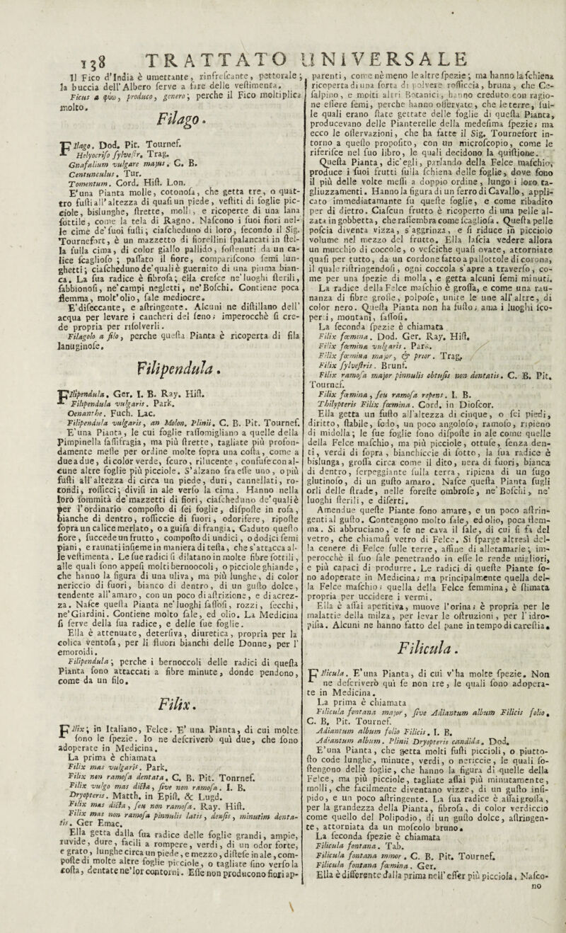 IJ Fico d’india è umettante, rinfrescante, pettorale; la buccia dell’Albero ferve a fare delle veltimenla. Ficus a fuco} produco, genero\ perche il Fico moltiplica molto. Fil ago. llago. Dod. Pit. Tournef. Helyocrifo fylveflr, Trag. Gnafalium vulgate ma\us. C. B. Centunoulus, Tur, Tomentum. Cord. Flirt. Lon. Euna Pianta molle, cotonofa, che getta tre, o quat¬ tro furti all' altezza di quartun piede, veftiti di foglie pic¬ cole, bislunghe, rtrette, molli, e ricoperte di una lana lottile, come la tela di Ragno. Nafcono i fuoi fiori nel¬ le cime de’fuoi furti; ciafcheduno di loro, fecondo il Sig. Tournefirt, è un mazzetto di fiorellini fpalancati in Idei¬ la iulla cima, di color giallo pallido, faftenuti da un ca¬ lice icagliofo ; partato il fiore, comparifcono femi lun¬ ghetti; ciafchedunode’qualiè guernito di una piuma bian¬ ca. La fu a radice è fibrofa; ella crefce ne’luoghi fterili, fabbionofi, ne’campi negletti, ne’Bofchi. Contiene poca flemma, molt’olio, fale mediocre. E’difeccante, e aftringente. Alcuni ne diftillano dell’ acqua per levare i cancheri del leno; imperocché fi cre¬ de propria per rilolverli. Filagolo a filo, perche quella Pianta è ricoperta di fila lanuginofe. parenti, come nè meno le altre fpezie ; ma hanno lafchiena ricoperta di una forta di polvere rofficcia, bruna, che Ce- falpino, e molti altri Botanici, hanno creduto cou ragio¬ ne elìere femi, perche hanno oljfervatc, che le terre, fal¬ le quali erano Hate gettate delle foglie di quella Pianta, producevano delle Pianterelle della medefima Ipezie; ma ecco le olìervazioni, che ha fatte il Sig. Tournefort in¬ torno a quello propofito, con un microfeopio, come le riferifee nel fuo libro, le quali decidono la quiftione. Quella Pianta, die’egli, parlando della Felce mafehio, produce i fuoi frutti fulla fchiena delle foglie, dove fono il più delle volte nielli a doppio ordine, lungo i loro ta¬ gliuzzamene. Hanno la figura di un ferro di Cavallo, appli¬ cato immedktamante fu quelle foglie, e come ribadito per di dietro. Ciafcun frutto è ricoperto di una pelle al¬ zata in gobbetta, che raffembra come fcagliofa. Quella pelle pofeia diventa vizza, s’aggrinza, e fi riduce in picciolo volume nel mezzo del frutto. Ella lafcia vedere allora un mucchio di coccole, o vefciche quafi ovate, attorniate quafi per tutto, da un cordone fatto a pallottole di corona, il qualeriftringendolì, ogni coccola s’apre a travedo, co¬ me per una fpezie di molla , e getta alcuni femi minuti. La radice della Felce mafehio è grorta, e come una rau- nanza di fibre grolle, polpofe, unite le une all’altre, di color nero. Quella Pianta non ha furto; ama i luoghi Ico- peri, montani, fartofi. La feconda fpezie è chiamata Filìx fccmina. Dod. Ger. Ray. Hirt, Fi!ix fiamma vulgati: . Para. Filìx foemina major, & prtor. Trag, Filìx fylvefiris. Bruni. Filix ramofa major pinnulis obtufìs non dentati*. C. iB. Pit. Tournef. filipendula. Ger. I. B. Ray. Hirt. Filipendula vulgati*. Park. Oenamhe. Fuch. Lac. Filipendula vulgati*, an Molon. Plinti. C. B. Pit. Tournef. E’una Pianta, le cui foglie rartomigliano a quelle della Pimpinella fartifragia, ma più rtrette, tagliate più profon¬ damente mede per ordine molte fopra una corta, come a dueadue, dicolor verde, feuro, rilucente , confufe con al¬ cune altre foglie più picciole. S’alzano fra elle uno, opiù furti all’altezza di circa un piede, duri, cannellati, ro¬ tondi, rorticci; divirt in ale verfo la cima. Hanno nella loro fommità de'mazzetti di fiori, ciafcheduno de’qualiè per l’ordinario comporto di fei foglie, difporte in rofa, bianche di dentro, rofficcie di fuori, odorifere, riporte fopra un calice merlato, oaguifa di frangia. Gaduto quello fiore, fuccede un frutto , comporto di undici, o dodici femi piani, e raunatiinrteme in maniera di teda, che s’attacca al¬ le vellimenta. Le fue radici fi dilatano in molte fibre Lottili, alle quali fono appefi molti bernoccoli, o picciole ghiande, che hanno la figura di una uliva, ma più lunghe, di color nericcio di fuori, bianco di dentro, di un gurto dolce, tendente all’amaro, con un poco diartrizione, e diacrez- za. Nafce quella Pianta ne’ luoghi faft'ofi, rozzi, fecchi, ne’Giardini. Contiene molto fale, ed olio. La Medicina fi ferve della fua radice, e delle fue foglie. Ella è attenuate, deterfiva, diuretica, propria per la colica ventofa, per li fluori bianchi delle Donne, per 1’ emoroidi. Filix fot mina , feu ramofa repens. I. B. Thìlypterìs Filix foemina. Cord, in Diofcor. Ella getta un furto all'altezza di cinque, o fei piedi, diritto, ftabile, fedo, un poco angolofo, ramofo, ripieno di midolla; le fue foglie fono difpofte in ale come quelle della Felce mafehio, ma più picciole, ottufe, fenza den¬ ti, verdi di fopra, bianchiccio di fotte, la fua radice è bislunga, grorta circa come il dito, nera di fuori, bianca di dentro, ferpeggiante folla terra, ripiena di un fugo glutinofo, di un gurto amaro. Nafce quella Pianta fogli orli delle ftrade, nelle forefte orabrofe, ne’Bofchi,, ne’ luoghi fterili, e diferti. Amendue quelle Piante fono amare, e un poco aftrin- gential gurto. Contengono molto file, ed olio, poca flem¬ ma. Si abbruciano, e fe ne cava il fale, di cui fi fa del vetro, che chiamali vetro di Felce. Si fparge altresì del¬ la cenere di Felce folle terre, affine di allecamarie ; im¬ perocché il fuo fale penetrando in effe le rende migliori, e più capaci di produrre. Le radici di quelle Piante fo¬ no adoperate in Medicina; ma principalmente quella del¬ la Felce mafehio; quella della Felce femmina, è fornata propria per uccidere i vermi. Ella è aliai aperitiva, muove l’orina» è propria per le malattie delia milza, per levar le oftruzioni, per l’idro- pifia. Alcuni ne hanno fatto del pane intempodicareftia* Fili cui a. Filipendula ; perche i bernoccoli delle radici di querta Pianta fono attaccati a fibre minute, donde pendono, come da un filo. Filix. ED/fo; in Italiano, Felce. E’ una Pianta, di cui molte fono le fpezie. Io ne deferiverò qui due, che fono adoperate in Medicina. La prima è chiamata Filìx mas vulgati*. Park. Fìhx nen ramofa dentata. C. B. Pit. Tonrnef. Filix vulgo mas ditta, five non ramofa. I. B. Dryopterts. Matth. in Epift. & Lugd. ■Fi/ùr mas ditta, feu non ramofa. IAay. Hirt. Fìhx mas non ramofa pinnulis latis, denfìs, minutirn denta¬ ti* . Ger Emac. Ella getta dalla fua radice delle foglie grandi, ampie, ruvide, dure, facili a rompere, verdi, di un odor forte, e grato, lunghe circa un piede, e mezzo, dirtele in ale, com- pofe di molte altre foglie picciole, o tagliate (ino verfo la coffa, dentatene lorcontorni. Erte non producono fioiiap- p llicula. E’una Pianta, di cui v’ha molte fpezie. Non ne deferiverò qui fe non tre, le quali fono adopera¬ te in Medicina. La prima è chiamata Filìcula fontana ?najor , fi ve Adlantum album Fìlicis folio, C. B, Pit. Tournef. Adìantum album folio Filici*. I. B. Ad'antum album. Plinii Dryopteris candida. Dod. E’una Pianta, che getta molti furti piccioli, o piutto- fto code lunghe, minute, verdi, o nericcio, le quali fo- ftengono delle foglie, che hanno la figura di quelle della Fe'ce, ma più picciole, tagliate aliai più minutamente, molli, che facilmente diventano vizze, di un gurto inli- pido, e un poco aftringente. La fua radice è affaigrolla, per la grandezza della Pianta, fibrofa, di color verdiccio come quello del Polipodio, di un gurto dolce, aftringen¬ te, attorniata da un mofcolo bruno* La feconda fpezie è chiamata Filicula fontana. Tab. Filicula fontana minor . C. B. Pit. Tournef. Filicula fontana foemina . Ger. Ella è differente dalla prima nell’ effier più picciola, Nafco¬ no