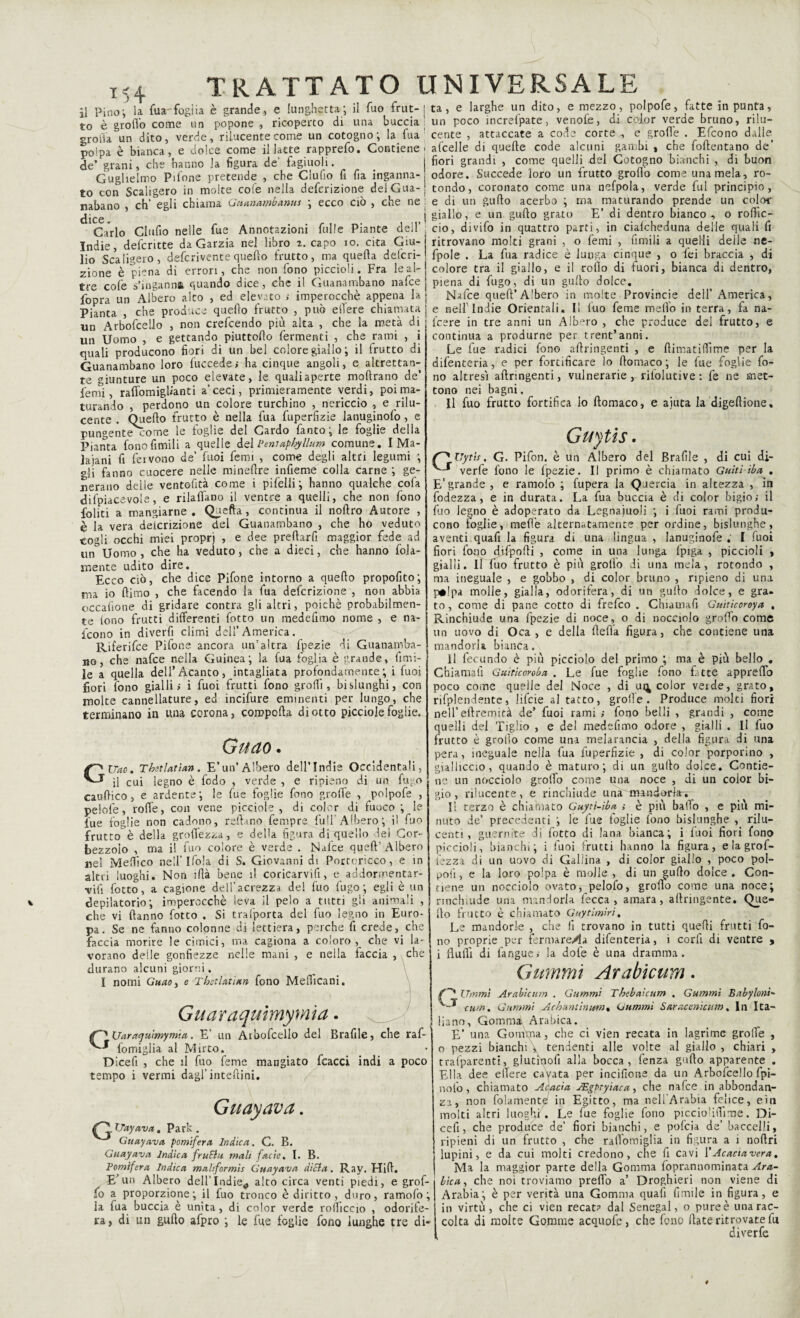 il Pino; la. fua'foglia è grande.) e lunghetta', il fuo frut-' ta, e larghe un dito, e mezzo, polpofe, fatte punta, to è grofio come un popone , ricoperto di una buccia un poco ìncrelpate, venofe, di coior verde bruno, rilu- sroiia un dito, verde, rilucente come un cotogno; la fua cente , attaccate a code corte e grolle . Eicono dalle p0ipa è bianca, e dolce come il latte rapprefo. Contiene, afcelle di quelle code alcuni gambi , che foftentano de L . ^ • f i I* I » r ' 1: £. /«Ama minili A r» I t r\ a ti n nin.ni'h i rii niirvn de’ grani, che hanno la figura de' fagiuoli. Guglielmo Pilone pretende , che Clufio fi fia inganna¬ to con Scaligero in molte cole nella deferizione delGua- fiori grandi , come quelli del Cotogno bianchi , di buon odore. Succede loro un frutto grofio come una mela, ro¬ tondo, coronato come una nefpola, verde fui principio, -Ajnn eh' eali chiama Giumambanns ; ecco ciò, che ne : e di un gullo acerbo ; ma maturando prende un color nanano , cu c&u , | .. t?» j: j—u:_ __cc.~ dice. Carlo Clufio nelle fue Annotazioni Tulle Piante dell’ Indie, deferitte da Garzia nel libro 2. capo 10. cita Giu¬ lio Scaligero, deferiventequello frutto, ma quella deferi¬ tone è piena di errori, che non fono piccioli. Fra le al¬ tre cole s’ingannai quando dice, che il Guanambano nafee fopra un Albero alto , ed elevato ; imperocché appena la Pianta , che produce quello frutto , può edere chiamata un Arbofcello , non crefcendo più alta , che la metà di un Uomo , e gettando piuttolìo fermenti , che rami , i quali producono fiori di un bel colore giallo ; il frutto di Guanambano loro fuccede; ha cinque angoli, e altrettan¬ te giunture un poco elevate, le quali aperte mollrano de’ Temi, radomighanti a’ceci, primieramente verdi, poi ma¬ turando , perdono un colore turchino , nericcio , e rilu¬ cente . Quello frutto è nella fua fuperfizie lanuginofo, e pungentecome le foglie del Cardo fanto; le foglie della Pianta fonofimili a quelle del Penìapbyllum comune. I Ma- lajani fi feivono de’ fuoi femi , come degli altri legumi ; gli fanno cuocere nelle minefire infieme colla carne ; ge¬ nerano delle ventefità come i pifelli; hanno qualche cofa difpiacevole, e riladano il ventre a quelli, che non fono foliti a mangiarne. Quella , continua il nollro Autore , è la vera deicrizione del Guanambano , che ho veduto cogli occhi miei proprj , e dee preflarfi maggior fede ad un Uomo , che ha veduto, che a dieci, che hanno fola- mente udito dire. Ecco ciò, che dice Pifone intorno a quello propofito; ma io (limo , che facendo la fua deferizione , non abbia occalione di gridare contra gli altri, poiché probabilmen¬ te lono frutti differenti fotto un medefimo nome , e na¬ scono in diverfi climi dell’America. Riferifce Pifone ancora un’altra fpezie di Guanamba¬ no, che nafee nella Guinea; la fua foglia è grande, {inai¬ le a quella dell’Acanto, intagliata profondamence ; i luoi fiori fono gialli» i fuoi frutti fono grò (li, bislunghi, con molte cannellature, ed incifure eminenti per lungo, che terminano in una corona, compolla di otto picciole foglie. G giallo, e un gullo grato E’ di dentro bianco, o rolfic- cio, divifo in quattro parti, in cialcheduna delle quali fi ritrovano molti grani , o femi , fimi li a quelli delle ne- fpole . La fua radice è lunga cinque , o lei braccia , di colore tra il giallo, e il rollo di fuori, bianca di dentro, piena di fugo, di un gullo dolce. Nafee quefl’Albero in molte Provincie dell’ America, e nell'Indie Orientali. Il luo feme melìo in terra, fa na- icere in tre anni un Albero , che produce del frutto, e continua a produrne per trent’anni. Le fue radici fono allringenti , e fiimatiffime per la difenteria, e per fortificare lo (lomaco; le fue foglie fo¬ no altresì allringenti, vulnerarie, rifolutive : fe ne met¬ tono nei bagni. Il fuo frutto fortifica lo ftomaco, e aiuta la digellione. GUytis, LrC, Guytis. Pifon. è un Albero del Braille , di cui di- Gitao. Uao. Thetlatian . E’un’Albero dell’Indie Occidentali, il cui legno è fodo , verde , e ripieno di un fugo caullico, e ardente; le fue foglie fono grolle , polpofe , pelofe, rolfe, con vene picciole , di color di fuoco ; le lue foglie non cadono, rellano fempre full Albero; il fuo frutto è della grofi'ezza, e della figura di quello dei Cor¬ bezzolo , ma il fuo colore è verde . Nalce quell’Albero nel Medico nell’ Ifola di S. Giovanni di Portericco, e in altri luoghi. Non iflà bene il coricarvifi, e addormentar- ■vifi fotto, a cagione dell’acrezza de! fuo fugo; egli è un depilatorio; imperocché leva il pelo a tutti gli animali , che vi ilanno fotto . Si trafporta del fuo legno in Euro¬ pa. Se ne fanno colonne di lettiera, perche fi crede, che faccia morire le cimici, ma cagiona a coloro, che vi la¬ vorano delle gonfiezze nelle mani , e nella faccia , che durano alcuni giorni. I nomi Guao , e Thetlatian fono Melficani. Guaraquimymia. Uaraquimymm. E’ un Arbofcello del Brafile, che raf- * fomiglia al Mirto. Dicefi , che il fuo feme mangiato fcacci indi a poco mpo i vermi dagl’ inteftini. Guayava. Uay ava. Park . Guayava pomifera Indica. C. B. Guayava Indica frutta mali facie. I. B. Pomifera Indica maliformis Guayava dieta, Ray. Hill. E’un Albero dell’Indie# alto circa venti piedi, e grof- fo a proporzione; il fuo tronco è diritto, duro, ramofo; la fua buccia è unita, di color verde rollicelo , odorife¬ ra, di un gullo afpro ; le fue foglie fono lunghe tre di- verfe fono le fpezie. Il primo è chiamato Guitì iba . E‘ grande , e ramofo ; fupera la Quercia in altezza , in fodezza, e in durata. La fua buccia è di color bigio; il fuo legno è adoperato da Legnaiuoli ; i fuoi rami produ¬ cono foglie, mede alternatamente per ordine, bislunghe, aventi quafi la figura di una lingua , lanuginofe . I fuoi fiori fono dìlpofli , come in una lunga lpiga , piccioli , gialli. Il fuo frutto è più grofio di una mela, rotondo , ma ineguale , e gobbo , di color bruno , ripieno di una p#!pa molle, gialla, odorifera, di un gullo dolce, e gra¬ to, come di pane cotto dì frefeo . Chiauiafi Gunìcoroya , Rinchiude una fpezie di noce, o di nocciolo grodo come un uovo di Oca, e della lled’a figura, che contiene una mandorla bianca. Il fecondo è più picciolo del primo ; ma è più bello . Chiamali Guitìcoroba . Le fue foghe fono fatte apprello poco come quelle del Noce , di ui^ color veide, grato, rifplendente, lifcie al tatto, grolle. Produce molti fiori nell’eftremità de’ fuoi rami ; fono belli , grandi , come quelli del Tiglio , e del medefimo odore , gialli . Il fuo frutto è grofio come una melarancia , della figura di una pera, ineguale nella fua fuperfizie, di color porporino , gialliccio, quando è maturo; di un gullo dolce. Contie¬ ne un nocciolo groifo come una noce , di un color bi¬ gio, rilucente, e rinchiude una mandorla^ I! terzo è chiamato Guyti-ìba ; è più ballo , e più mi¬ nuto de’ precedenti ; le fue foglie fono bislunghe , rilu¬ centi , guernite di fotto di lana bianca; i (noi fiori fono piccioli, bianchi; i fuoi frutti hanno la figura, elagrof- lézza di un uovo di Gallina , di color giallo , poco poi- poli , e la loro polpa è molle , di un gullo dolce . Con¬ tiene un nocciolo ovato, pelofo, grofio come una noce; rinchiude una mandorla lecca, amara, allringente. Que¬ llo frutto è chiamato Guytimiri, Le mandorle , che fi trovano in tutti quelli frutti fo¬ no proprie per fermare^a difenteria, i cori! di ventre > 1 Aulii di fangue; la dofe è una dramma. Gammi Arabicum. f~' lTmmì Arabicum . Gummi Tbebaicum , Gummi Baby Ioni- cu/f>. Gummi Arbant inani» njummi Saracenicum, In Ita¬ liano, Gommi Arabica. E’ una Gomma, che ci vien recata in lagrime grolle , o pezzi bianchi , tendenti alle volte al giallo , chiari , trafparenti, giurinoli alla bocca, lenza gallo apparente . Ella dee efiere cavata per incifione da un Arbofcello fpi- nolo , chiamato Aaacia Mgpryiaca, che nafee in abbondan- 2 a, non (blamente in Egitto, ma nell'Arabia felice, e in molti altri luoghi. Le fue foglie fono pi cc ioidi me. Di¬ cefi, che produce de’ fiori bianchi, e pofcia de’ baccelli, ripieni di un frutto , che radomiglia in figura a i noftri lupini, e da cui molti credono, che fi cavi l’Acaciavera» Ma la maggior parte della Gomma foprannominata Ara¬ bica, che noi troviamo predo a’ Droghieri non viene di Arabia; è per verità una Gomma quali limile in figura, e in virtù, che ci vien recata dal Senegai, o pure è una rac¬ colta di molte Gomme acquofe, che fono fiate ritrovate tu diverfe