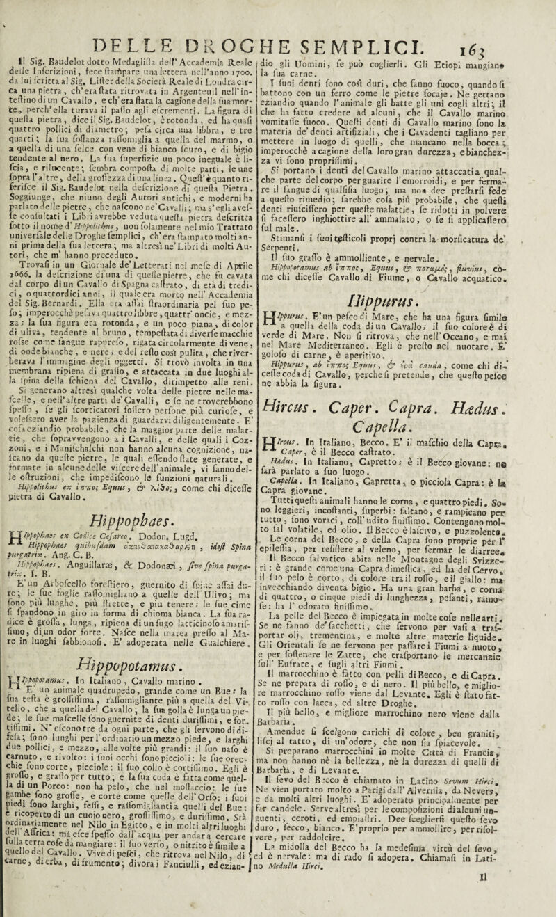 Il Sig._ Baudelot dotto Medaglida dell’Accademia Reale delie Infcrizioni, lece (lampare unalettera nell’anno 1700. da 1 ui (cricca al Sig. Lifter della Società Reale di Londracir- ca una pietra, ch’era fiata ritrovata in Argenteuil nell’in¬ terino di un Cavallo, e ch’era fiata la cagione della Tua mor¬ te, perch’ella turava il palio agli eferementi. La figura di quella pietra, dice il Sig. Baudelot, èrotonJa, ed haquafi quattro pollici di diametro; pela circa una libbra, e tre quarti; la fua follanza raffomiglia a quella del marmo, o a quella di una felce con vene di bianco feuro, e di bigio tendente al nero. La fua fuperfizie un poco ineguale è li- feia, e rilucente; fernbra compolla di molte parti, leune fopralVtre, della groffezza di una linea. Quell’ è quanto ri¬ ferire il Sig. Baudelot nella definizione di quella Pietra. Soggiunge, che niuno degli Autori antichi, e moderni ha parlato delle pietre, che naficono ne’Cavalli ; ma s’egli avef- ie confutati i Libriavrebbe veduta quella pietra deferita fotto il nome à'Hippolithus y non fidamente nel mio Trattato univerfaledelle Droghe femplici, ch’era ftatnpato molti an¬ ni prima della fua lettera; ma altresì ne’Libri di molti Au¬ tori, che m’ hanno preceduto. Trovali in un Giornale de’Letterati nel mefe di Aprile 1&66. la detenzione dfuna di quelle pietre, che fu cavata da! corpo di un Cavallo di Spagna caftrato, di età di tredi¬ ci, o quattordici anni, il quale era morto nell’Accademia del Sig. Bernardi. Ella era aliai llraordinaria pel fuo pe¬ lo; imperocché pelava quattro libbre ,quattr’oncie, e mez¬ za; la fua figura era rotonda, e un poco piana, di color di uliva, tendente a! bruno, tempellatadi diverfemacchie rofse come fangue rapnrefo, rigata circolarmente di vene, di ondebiinche, e nere; edel redo così pulita, che river¬ berava l’immagine degli oggetti. Si trovò involta in una membrana ripiena di grado, e attaccata in due luoghi al¬ la ipina della fchiena del Cavallo, dirimpetto alle reni. Si generano altresì qualche volta delle pietre nelle ma¬ lcerte, e nell’altre parti de’Cavalli, e fe ne troverebbono fpeflfo , fe gli fcorticatori fodero perfone più curiofe, e volefsero aver la pazienza di guardarvi diligentemente. E’ co fa eziandìo probabile, chela maggior parte delle malat¬ tie , che fopravvengono a i Cavalli, e delle quali i Coz¬ zoni, e i Manilchalchi non hanno alcuna cognizione, na¬ scano da quelle pietre, le quali effendofiate generate, e formate in alcunedelle vifceredell’animale, vi fannodel- le odruzioni, che impedironole funzioni naturali. Hippolitbus ex inno; Equus, & \l&o;, come chi diceffe pietra di Cavallo. H Hippophaes• TIppopba.es ex Codice Cefareo. Dodon. Lugd. Hippophaes qu'tbufdam dy.xvòzvaxaò-aplgn , ìdefl Spina purgar ri x . Ang. C. B. Hippophaes. Anguillaras, & Dodonaei , ftve [pina purga- trix, I. B. E’un Arbofcello forediero, guernito di fpine affai du¬ re; le fue foglie radòmigliano a quelle dell Ulivo; ma tono piu lunghe, più (Lette, e piu tenere; le fue cime fi lpandono in giro in forma di chioma bianca. La fua ra¬ dice è grolla, lunga, ripiena di un fugo latticinofo amarif- (imo, di un odor forte. Nafce nella marea prefio a! Ma¬ re in luoghi fabbionofi, E’ adoperata nelle Gualchiere . Hìppopotanms. IT Ippopotami. In Italiano, Cavallo marino. E un animale quadrupedo, grande come un Bue; la fua teda è groffifiìma, rafiomigliante più a quella del Vi¬ tello, che a quella del Cavallo; la fuagoilaè lungaun pie¬ de; le fue^mafcellefono guernite di denti duriflìmi, efor, tifiìmi. N’ eleo no tre da ogni parte, che gli fervono di di¬ fesi fono lunghi per l'ordinario un mezzo piede, e larghi due pollici, e mezzo, alle volte più grandi: il fuo nate è carnuto, e rivolto: i fuoi occhi fono piccioli : le fue orec¬ chie fono corte, picciole: il fuo collo è cortifiìmo. Egli è grofio, e grado per tutto; e la fua coda è fatta come quel¬ la di un Porco: non ha pelo, che ne! mod.iccio: le fue gambe fono groflfe, e corte come quelle deil’Orfo: i fuoi piedi fono larghi, fedì, e ralfomigliantia quelli del Bue: e ricoperto di un cuoio aero, grofiìfiìmo, e durifiìmo. Stà ordinanamente nel Nilo in Egitto, e in molti alf ri luoghi dell Affrica: màeleefpqffo dall'acqua per andara cercare iulla terra cofeda mangiare: il fuoverfo, o nitrito è fimile a quello del Cavallo. V*ive di pefei, che ritrova ne! Nilo, di carne, di erba, di frumento; divorai Fanciulli, ed ezian¬ dio gli Uomini, fe può coglierli. Gli Etiopi mangian® la fua carne. I fuoi denti fono così duri, che fanno fuoco, quando lì battono con un ferro come le pietre focaje. Ne gettano eziandio quando l’animale gli batte gli uni cogli altri; il che ha fatto credere ad alcuni, che il Cavallo marino vomitaffe fuoco. Querti denti di Cavallo marino fono la, materia de’denti artìfiziali, che i Cavadenti tagliano per mettere in luogo di quelli, che mancano nella bocca ; imperocché a cagione della loro gran durezza, e bianchez¬ za vi fono propridìmi. Si portano i denti del Cavallo marino attaccati a qual¬ che parte del corpo per guarire l’emorroidi, e per ferma¬ re il fangue di qualfifia luogo; ma no» dee predarli fede a quedo rimedio; farebbe cofa più probabile, che quelli denti riufeiffero per quelle malattie, fe ridotti in polvere fi facelfero inghiottire all’ammalato, o fe fi applicaffero fui male. Stimanfi i fuoi tpfticoli proprj contra la morficatura de Serpenti. II fuo graffo è ammolliente, e nervate. Hippopotamus ab 'inno; , Equus , & norupiò; , fiuvius, cò¬ me chi diceffe Cavallo di Fiume, o Cavallo acquatico. H Hippm J ippurus. Ippurus. E’un pefeedi Mare, che ha una figura fimile a quella della coda di un Cavallo; il fuo coloreè di verde di Mare. Non fi ritrova, che nell’Oceano, e mai ne! Mare Mediterraneo. Egli è predo nel nuotare. È’ gololo di carne, è aperitivo. Hippurus, ab 'inno; Equus, & bpà cstuda , come chi di¬ ceffe coda di Cavallo, perche fi pretende, che quedopefee ne abbia la figura. H' ! Hircus. Caper. Capra. tìadus. Capella. Ircus. In Italiano, Becco. E’ il mafehio della Capra,, Caper, è il Becco cadrato. H&dus. In Italiano, Capretto; è il Becco giovane : ne farà parlato a fuo luogo. Capella. In Italiano, Capretta, o picciola Capra: è I» Capra giovane. Tuttiquedi animali hanno le corna, e quattro piedi. So* no leggieri, incodanti, fuperbi : faltano, e rampicano per tutto , fono voraci, coll’udito finidìrao. Contengono mol¬ to (al volatile, ed olio. Il Becco èlafcivo, e puzzolenta* Le corna del Becco, e della Capra fono proprie per T epiledìa, per refidere al veleno, per fermar le diarree* Il Becco faivatico abita nelle Montagne degli Svizze¬ ri : è grande come una Capra dimedica, ed ha del Cervo, il (m pelo è corto, di colore trailroffo, eil giallo: ma invecchiando diventa bigio. Ha una gran barba, e corna di quattro, o cinque piedi di lunghezza, pefanti, ramo- fe: ha T odorato finidìmo. La pelle del Becco è impiegatain moltecofe nellearti. Se ne fanno de’facchetti, che fervono per vali a tras¬ portar ol}, trementina, e molte altre materie liquide. Gli Orientali fe ne fervono per paffarei Fiumi a nuoto, e per fodenere le Zitte, che trafportano le mercanzie full’ Eufrate, e fugli altri Fiumi . Il marrocchino è Fatto con pelli diBecco, e di Capra. Se ne prepara di rodò, e di nero. Il più bello, e miglio¬ re marrocchino rodo viene dal Levante. Egli è dato fat¬ to rodo con lacca, ed altre Droghe. Il più bello, e migliore marrochino nero viene dalla Barbarla. Amendue fi feelgono carichi di colore , ben graniti, Iifcj al tatto, di un’odore, che non fia fpiacevole. Si preparano marrocchini in molte Città di Francia, ma non hanno nè la bellezza, nè la durezza di quelli di Barbarla, e di Levante. Il fevo del Becco è chiamato in Latino Sevnm Hìrcim Ne vien portato molto a Parigi dall’Alvernia, daNevers, e da molti altri luoghi. E’adoperato principalmente per far candele. Servealtresì per lecompofizioni dialcuni un¬ guenti, ceroti, ed empiadri. Dee teeglierfi quello fevo duro, fecco, bianco. E’proprio per ammollire, perrifol- vere, per raddolcire. La midolla del Becco ha la medefima virtù del fevo, ed è nervate: ma di rado fi adopera, Chiamafi in Lati¬ no Meditila Hirci. Il