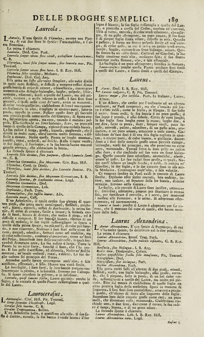 Laureola . J Aureola . E’una fpezie di TbymeUa, ovvero una Pian¬ ta, di cui due fono le fpezie: l’unamafchio, e l’al¬ tra Femmina. La prima è chiamata Laureola. Dod. Ger. Park. Laureola femper virens flore viridi, ejuibufdam Laureola mas. C. B. TbymeUa, /««ri folio femper virens, /SW laureola mas, Pit. Tournef. Laureola femper virens flore luteo. I. B. Ray. Hid. TbymeUa foliis viridi bus „ MefuSSO . Dapbnoides. Dod. Gal. Ang. Ella getta un fudo alle volte femplice, alle volte divifo in molti rami fieffibilì, e difficili a rompere vediti di una groda buccia di color di cenere, o bianchiccia, con un gran numero in alto di foghe bislunghe, larghe, polpofe, lifcie, nericcie, rilucenti, dindi a quelle de! Lauro, ma più pic¬ ei.0^ rannate, o mede infieme in cedi, I fuoi fiori fono piccioli, d:1 podi nelle cime de’rami, come in mazzetti, di color verdegiaìlìccìo; ciafcheduno di loro è una cannuc¬ cia (palancata m alto, e tagliata in quattro parti, fatte in punta, oppode in croce. Padato quedo fiore gli fuccede una coccola groda come quella del Ginepro, di figura ova¬ ta, fui principio aperta, ma nera, quando è matura; pol- pofa. Ella rinchiude un feme bislungo, duro, un poco più lungo di quello della Canapa, ripieno di una midolla bianca. La fua radice è lunga, groda, legnofa, pieghevole, che fi divide in molti rami, ches'interna molto fotterra, edif- ficile a cavare. Nafce queda Pianta ne’luoghi montani, incolti, rozzi, ombrofi , ne’Bofchi. Reda fempre verde ; le fue ioglie, il fuo frutto, e la fua buccia hanno una così grande acrezza, che abbruciano la bocca. La feconda fpezie è chiamata Laureola folto deciduo, flore purpureo, offlcìnìs Laureola fgemi¬ na C. B. CbameUa Germanica, five Mezereum. Ger. Ray. Hid. TbymeUa. Cord, in Diofc. Tbymel&a, lauri folio deciduo, five Laureola famina. Pit. Tournef. Laureola folio deciduo, five Mezereum Germanicum. I. B. Laureola fantina, Dapbnoides crocea, Lugd. CbameUa Germanica. Dod. Mezereum Germanicum. Lob. Dapbnoides. Fuch. Turn. Cbam&dapbne, five pufilla lauras, Adv» Laureola major. Cad, E un Arbofcelio, il quale crefce fino altezza di quat¬ tro piedi, che getta molti ramilegnofi, fleffibili, pieghe- V,i 1 ’ rn*> rotondi, vediti di duebuccie, la prima fior¬ ii ej-r co. or . cenere> facile a levare; la feconda ver- de di tuori, bianca di dentro, che molto fi piega, ed è difficile a rompere. I! fuo legnose bianco, ripieno di un poco di midolla; le fue foglie radomigliano in figura a quelle della prima fpezie, ma piùmolli, d i color più fmor- to, e non rilucente. Nalcono i fuoi fiori nelle cime de’ rami, piccioli, odoriferi, formati come nel mufchio, ma di color rodo fmorto , tendente al porporino, come ne’fiori S9 legno è bianco; la fua foglia raflomiglia a quella de! Lau¬ ro, o piuttodo a quella del Cedro, merlata ne’contorni, lifcia al tatto, nervofa, di color verde rilucente, che ralle¬ gra, di un gudo adringente, un poco amaro. Il fuo fiore e di cinque foglie fenza odore, difpode in rofa. Quando e padato, fi forma un frutto polpofo fimile ad una cirie- gia, di color rodo, in cui fi trova un gufcio quafi ovato, fiottile, fragile, ripienodiun feme bislungo, amaro. Que¬ do frutto ha un tulio dolce. Coltivafi ne’Giardini; la fua foglia contiene molt’olio, mediocre fale; il fuo frutto contiene molta flemma, olio, e fale eflenziale. La fua foglia è un poco adringente; fortifica Io domaco. Lauro-cerafus> perche queda Pianta produce fiori fimili a quelli del Lauro, e frutti fimili a quelli del Ciriegio. Laurus. T Aurus. Dod. I. B. Ray. Hid. Laurus vulgaris. C. B. Pit. Tournef. Laurus major , five laùfolia. Park. In Italiano, Lauro, o Alloro. E’un Albero, che crefce per l’ordinario ad un altezza mediocre, ne’Paefi temperati, ma che s’innalza più fiot¬ to i climi caldi, come in Italia, in lfpagna. Il fuo fudo è unito, fenza nodi; la fua buccia è un poco groffa; il fuo legno è porofo, e aflai debole. Getta de’rami lunghi; le fue toglie fono lunghe come la mano; larghe due, o tre dita, fatte in punta, dure, fempre verdi, poco fu- gofe, nervofe, pulite, odorifere, di un gudo acro, aro¬ matico, e un poco amaro, attaccate a code corte. Cia¬ fcheduno de’fuoi fiori è di una fola foglia tagliata in quat¬ tro, o cinque parti, di color bianco, o gialliccio. Succe¬ dono a i fiori delle coccole grofie come picciole ciriegie, bislunghe, verdi fui principio, ma che prendono un color nero, maturando. Trovafi fotto la loro pelle un gufcio adai duro, e che rinchiude nel fuo voto un feme bislun¬ go. Quede coccole fono odorifere, aromatiche, oleofe, amare al gudo. Le fue radici fono grolle% ineguali. Na¬ fce qued’ Albero ne’luoghi fecchi, e caldi. Si coltiva ne’ Giardini; le fue foglie, e le fue coccole (ono in ufo nel¬ la Medicina. Contengono molt’olio, e fale volatile. Ci vengono fpedite da Paefi caldi le coccole di Lauro fece he. Debbono eder feelte recenti, ben nodrite, in¬ tere, non tarlate, nè feparate dalla 1 or buccia, di color nericcio. Servono nella tintura. Le foglie, e le coccole di Lauro fono incifive, attenuan¬ ti, detersive, rifolutive, proprie per ifcacciare le vento¬ sità, per fortificare il cervello, e i nervi, per muovere i medrui alle Femmine, e le orine. Si adoperano eter¬ namente, ed internamente. Laurus a laude ; perche il Lauro è adoperato per far co¬ rone, che fi mettono fui capo di quelli, che hanno meri¬ tate delle iodi. Laurus alexandrina. T Aurus Alexandrina. E’una fpezie di Pugnitopo, di cui v’ha molte fpezie. Io deferiverò qui le due principali. La prima è chiamata Laurus Alexandrina. Brunf. Trag. Fuch. j. nr _ J \ :-V r ,?• uc 1,1,11 ! laurus suexanarina. munì. i rag. ruen. del y eleo. Succedonb loro delle coccole rode, le quali fec- ! Laurus Alexandrina, fruEìu pedtculo infidente. C. B Rav candofi diventano nere. La fua radice è lunga. Tutta la Hid. * * * K‘7’ Pianta ha un odor forte, fuorché il fiore, che l’ha gra- ! Bonifacìa, five Bislingua . I. B. Ang to. Il fuo gudo èacnffimo, ed abbrucia. Nafce ne’Bofchi - ■ ■ montani, ne’luoghi ombrofi, rozzi, ediferti. Le fue fo- glie cadono fui principio del Verno. Amendue quede fpezie contengono molt’oiio, e fale acridimo, edenziale, e fido. Hanno una virtù fimile. Le ioro.foglie, i loro futti, le loro bucci? purgano vio¬ lentemente la pituita, e lefierofità. Servono per l'idropi- iìa. Si fanno prendere in polvere, o in infufione. Laureola, quafi Laurus p'filla, Lauro picciolo; perche le foglie, e le coccole di quede Piante radomigliano a quel¬ le del Lauro. Laurocerafus. f Aurocerafus. Ciuf. Hid. Pit. Tournef, Lotus fecundus Theophrafli. Lugd. Cerafus folio laurino, C. B. Cerafus Trapeztmttna. Bellon. E;un Arbofcelio bello, e gratiffimo aliavida. Il fuofu- ito e diritto, ramofo, la fua buccia è verde bruna; il fuo Radix id&a. Diofcoridis. Colum. Rufcus anguftifolìus fruciu folio innafeente, Pit. Tournef. Hppogloffum, Dod. Hippogloffum, five Bislingua. Park. | Daphne Alexandrina. Fuch. Ella getta molti fudi all’altezza di due piedi, minuti, fleffibili, verdi, con foglie bislunghe, adai grode, nervo¬ fe, che fi piegano, fatte in punta, di un bel color ver¬ de, radomig ianti a quelle del Lauro, ma molto più pic¬ ciole. Elee dal mezzo di ciafcheduna di quede foglie un altra piccio'a foglia della medefima figura in maniera di linguetta. I fuoi fiori fono piccioliffimi, attaccala piccio¬ li gambi, ch’efcono di fotto alle linguette delle foglie. Succedono loro delle coccole groflè come ceci, un poco molli, che diventano rode, maturando. Ciafcheduna rin¬ chiude uno, o due femi, duri come il corno; la fua radi¬ ce è lunga, bianca, e di un grato odore. La feconda fpezie è chiamata Laurus Alexandrina. Lob. I. B. Ray. Hid. Laurus Alexandrina vera. Lugd. Rufcus i