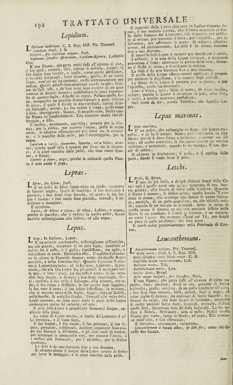 IcjZ Lepìdium, J Epìilum Urifclium. C. B. Ray* Hift- Pit. Touinef. Lepìdium Pauli. I. B. Pireritis, fi ve Lepìdium vulgare. ParK. / ,, .. Raphanu* fylvefiris officmarum, Lepìdium JEgmera . Lobbelio G?.’ pianta, che getta molti furti all’altezza di due, o rotondi,difc), ripieni di midolla ramofi - le fue foglie fono lunghe, e larghe, come quelle del Cedro, e talvolta più grandi, fatte in punta grafie, di un veroe f-uro merlate ne’lor contorni, mefle alternatamente per ordine Quelle abbaffo fono attaccate a code lunghe; le ci¬ me deTuoi furti, e de’ fuoi rami fono cariche di un gran Numero di fioretti bianchi ; ciafchedi.no dedali ècompo- fìo di quattro foglie, difporte in croce. Palìatoquefto fio¬ re, comparifce un picciolo frutto formato a guifa di ferro di oic'-a il quale fi divide in due riportigli, ripieni dite¬ mi bislunghi, minuti. La fua radice è lunga, grolla come Udito, ìerpeggiante, bianco, di ungurtoacro, Naiceque¬ lla Pianta ne’luoghiombrofi. Ella contiene molto ialeel- fenziale, e firto. . .. . . c . E’incirtva, penetrante, aperitiva ; propria per la Icia- tica, per la rabbia, per muover l’orina, prela in acqua cotta Si adopera erternamente per levar via le cicatri¬ ci, e le macchie dalla pelle, per l’empetiggine, per la Lepìdium a XsttiV, fquamma, fquama, vel a decor¬ tico, perche queft’erba è propria per levar vja le cicatri¬ ci, e le altre macchie dalla pelle, che fono come fgua- me?iperitìs apipere, pepe ; perche la radice di quella Pian¬ ta è aera come il pepe. Il rapprefo della Lepre chiamato in Latino Coagula Le¬ pori*, è una materia caciofa, che li trova attaccata al fon¬ do dello rtomaco del Leprotto-, e,la e propria per rel.rte- re al veleno, per muovere il leme, per 1 epilefiia, per la difenteria, per affrettare il parto. Si adopera eftenor- mente, ed interiormente. La dole e da mezza dramma fino a una dramma. H cervello della Lepre è proprio per fortificare 1 nervi. I terticoli, e le rem della Lepre dileccati, o preparati provocano il feme, attenuano la pietra delle reni, ferma¬ no il fi urto di orina, e fortificano la veicica. La dofe è da uno (crepolo fino a una dramma. II graffo della Lepre erte rio rmente applicato è proprio per eccitare la digertione, e la marcia degli aofcefli. Lo lderco della Lepre è proprio per la pietra, e per l’epileflia, prefo internamente. , . ^ Lepiis a 'KÌT.oc, Uvis, lifeio al tatto, & Titfo:, tncejjus, andare; perche la Lepre è ricoperta di peli, aitai lite), e molli, e perche cammina prefiifiimo . Hafe viene da Ha*, parola Tedelca, che fignifica Le¬ pre . Le pus mar ìnu s Lepras. LEpus marìnns, E* un pefee, che rartomiglia in figur olla Lepre ter- rertre, e ne ha il colore. Nuota per ' ordinario in aito Mare; perciò fi dura fatica a peccarlo ; contiene un fai acro, ed anche corrofivo; la fua carne muove un vomito violento, e pericolofo, quando fe ne mangia. E una ipe- zie di veleno. n . .. , „ Si adopera in depilatorio; fi perta, e fi applica iUfie parti, donde fi vuole levar il pelo. \ Lei chi. LZpras, feu Pforus. Jonrt. E’un pefee di Mare lungo circa un piede, ricoperto di fquame larghe, fparfo di macchie; il fuo mortacelo è picciolo; i fuoi denti fono bianchi, ed acuti; la fiu lin¬ gua è bianca; i Cuoi occhi fono piccioli, rotondi; è ec¬ cellente a mangiare. E’aperitivo. Lepras, & Pforus a Lepra , & E fora , -Lebbra , e rogna, perche le macchie, che li vedono fu quello pefee, hanno qualche rafiomiglianza alla lebbra, ed alla rogna. Lepus< L Èrebi, C. Biron. , E’uno de più belli, e de’piu delicati frutti della Ci- I na; egli è grotto come una galla, ricoperto di una buc¬ cia granita, aliai fottile di color rodo vivi,Timo. Quando il frutto è maturo, di frefeo colto, quella buccia fi ter¬ mina in punta; ella ravvolge una fpezie di pruna bislun¬ ga, morbida, di un gurto gratiiTimo, ma che rilcaLa mol¬ to, quando fe ne mangia in quantità. Sotto la polpa di querta pruna fi ritrova un picciolo nocciolo faffolo della figura di un garofano. I vjinefi la feccano, e ne mangia¬ no tutto l’anno. Ne mettono altresì nel Tè, per dargli un poco di gurto acerbetto, che loro piace. Il Letchi nafee particolarmente nella Provincia di Can- ton. Epus. In Italiano, Lepre. E’un animale quadrupede, rafiomigliante al Coniglio, ma più grande, ricoperto di un pelo bigio, tendente al colore fra il rollo, e il giallo, timidHfimo , ma agile, e velocilfimo al corfo . Moltiplica aliai. Il mafehio è chiama¬ to da alcuni in Francefe Eueattot, come chidicefle Becco picciolo, e lafua femmina Hafe. Quando è giovane fi chia¬ ma in Y,-\i\\\&Lcpufculus, ed in Italiano, Leprotto, Si pre¬ tende ,-^he alla fola Lepre fra glianimali fi tre vi pelo nel¬ la gola, e fiotto i piedi. La fua teda è corta; le fue orec¬ chie fono lunghe, e diritte; i fuoi denti fonolunghi, for¬ ti, incifivi ; il fuo co lo è bislungo, afia-i minuto, roton¬ do; il fuo corpo è tiertìbile ; le fue gambe fono leggiere; la fua voce è acuta; il luo udito èfiniTimo, in maniera, che al minimo moto delle foglie, fugge; abita ne’Bofchi, nelleforerte. Si nodrifee di erbe. Trovanfialle voltedelle Lepri cornute, ma fono rare; tutte le parti delle Lepre contengono molto fai volatile, ed olio. Il pelo della Lepre è proprio per fermare il fangue, ap¬ plicato fulla piaga. La carne di Lepre tenera, o quella del Leprotto è af¬ fai nutritiva, e di buon fugo. Il fuo fangue, il fuo cuore, il fuo polmone, il fuo fe¬ gato, preparati, odifeccati, e-ridotti in polvere fono pro¬ pri per fermare la difenteria, e gli altri corfi di ventre, per attenuare la pietra nelle reni, per muover l’orina, e i mertrui alle Femmine , per 1’ epilelfia, per la febbre quartana. La dofe è da uno fcropolo fino a una dramma. Si adopera altresì il fangue della Lepre cavato di frefeo per levar le lentiggini, e le altre macchie dalla pelle. Leucanthemum. LEucanthemum vulgare. Pit. Tournef. Belli* major. Dod, I. B. Ray. Hirt. Belli* fylvefiris caule foliofo major. C. B. Confolìda media vuln;rariornm. Lob. Belltcum maw*. Tab. Buphthalmum majus. Lon. Oculus Bovi* , Brunf. Belli* major vu'garis , fìve fylvefiris. Park. F’una Pianta, che getta furti all’altezza di circa un piede, duri, quadrati, divifi in ale, guerniti di foglie bislunghe, grafie, merlate, di un gurto tendente all’acro; i fuoi fiori fono rotondi, belli, gentili, fatti a raggi, di color giallo di dentro, ma coronaci di foglie bianche, !o- ftenuti da calici, che fono fpezie di berrette, comporte di molte picciole foglie dure, fcagliofe, nericcie. Pinati quelli fiori, fuccedono loro de’ femi bislunghi. La fila ra¬ dice è fibrofa, rtrifeiante , aera al gurto. Nafee querta Pianta per tutto, lungo le rtrade, ne’prati. Ella contie¬ ne molt’olio, e fiale elìenziale. E’deterfiva, attenuante, vulneraria. Leucanthemum a Xftwj albus , Ó* fio* \ come chi di* cefle fior bianco. Leu■