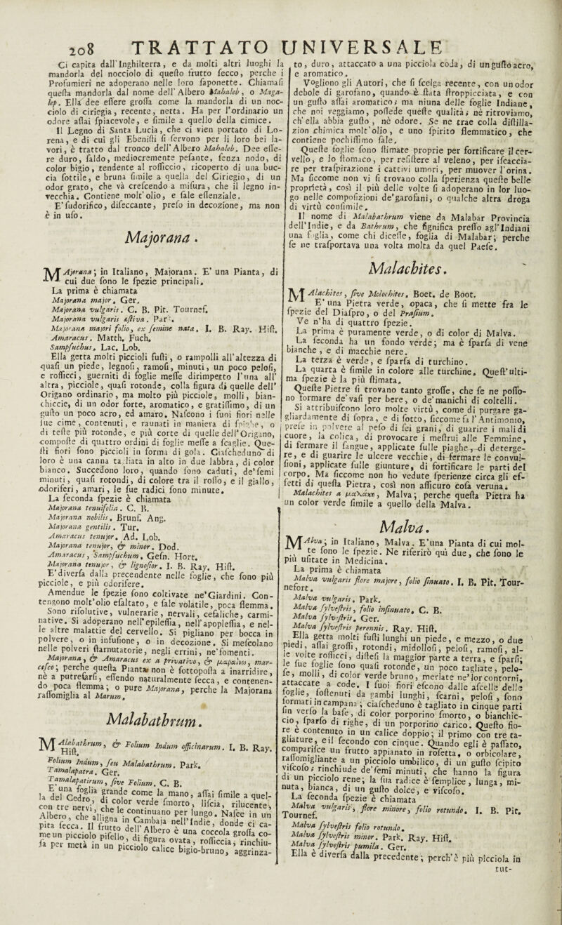 Ci capita dall’Inghilterra, e da molti altri luoghi la mandorla del nocciolo di quello frutto fecco, perche i Profumieri ne adoperano nelle loro faponette. Chiamali quella mandorla dal nome dell’ Albero Mah deb, o Maga¬ le/). Ellaf dee edere grolla come la mandorla di un noc¬ ciolo di ciriegia, recente, netta. Ha per 1*ordinario un odore aliai fpiacevole, e fumile a quello della cimice. Il Legno di Santa Lucia, che ci vien portato di Lo¬ rena, e di cui gli Ebenidi fi fervono per li loro bei la¬ vori, è tratto dal tronco dell’Albero Mah deb. Dee ede¬ re duro, faldo, mediocremente pedante, fenza nodo, di color bigio, tendente al rodicelo, ricoperto di una buc¬ cia dottile, e bruna fnnile a quella del Ciriegio, di un odor grato, che và crefcendo a mifura, che il legno in¬ vecchia. Contiene molt’olio, e fa le edenziale. E’fudorifico, difeccante, predo in decozione, ma non è in ufo. Majorana TVT Aprano, ; in Italiano, Maiorana. E’ una Pianta, di **-*-* cui due fono le fpezie principali» La prima è chiamata Majorana major, Ger. Majorana vulgarìs. C. B. Pit. Tournef. Majorana vulgarìs afliva. Par'. Majorana maiorì folio, ex {emine nata, J, B. Ray. Hid. Amaracus. Matth. Fuch. Sampfuchus, Lac. Lob. Ella getta molti piccioli furti, o rampolli all’altezza di quafi un piede, legnofi, ramofi, minuti, un poco pelofi, e rofficci, guerniti di foglie mefle dirimpetto Luna all’ altra, picciole, quafi rotonde, colla figura di quelle dell’ Origano ordinario, ma molto più picciole, molli, bian¬ chiccio, di un odor forte, aromatico, e gratidimo, di un gudo un poco acro, ed amaro. Nafcono i funi fiori nelle lue cime, contenuti, e raunati in maniera di fpighe, o di tede più rotonde, e più corte di quelle dell’Origano, compode di quattro ordini di foglie mede a fcaglie. Que¬ lli fiori fono piccioli in forma di gola. Ciafcheduno di loro è una canna radiata in alto in due labbra, di color bianco. Succedono loro, quando fono caduti, de’femi minuti, quafi rotondi, di colore tra il rodo, e il giallo, ■odoriferi, amari, le fue radici fono minute. La feconda fpezie è chiamata Majorana tenuifolìa . C. B. 1 Majorana nobilis, Brunf. Ang. Majorana gentilìs . Tur. Amaractis tenujor. Ad. Lob. Majorana tenujor, & minor. Dod. Amaracus , 'Sampfuchum , Gefn. Hort. Majorana tenujor, & lìgnofior. I. B. Ray. Hid. E diverfa dada precendente nelle toglie, che fono più picciole, e piu odorifere. Amendue le fpezie fono coltivate ne’Giardini. Con¬ tengono molt olio efaltato, e fale volatile, poca flemma. Sono rilolutive, vulnerarie, nervali, cefaliche, carmi¬ native. Si adoperano nelfepiledia, nell’apopleflìa, e nel- e a.tre malattie del cervello. Si pigliano per bocca in polvere, o in infufione, o in decozione. Si mefcolano nelie polveri ftarnutatorie, negli errini, ne’fomenti. Majorana, & Amaracus ex a privativo, & /Mcipaìm, mar- ce/co- perche queda Pianta* non è fottopoda a inaridire, ne a putrefcrfi, edendo naturalmente fecca, e contenen- «(Tornigli. SZiruir™ perche ,a Mai°ranl to, duro, attaccato a una picciola coda, di un gudo acro, e aromatico . Vogliono gli Autori, che fi fcelga recente, con un odor debole di garofano, quando-è ihta droppicciata, e con un gudo affai aromatico; ma niuna delle foglie Indiane, che noi veggiamo, pofiede quede qualità; nè ritroviamo, ch'ella abbia gudo , nè odore. Se ne trae colla didilla- zion chimica molt’olio, e uno fpirito flemmatico, che contiene pochidìmo fale. Quede foglie fono llimate proprie per fortificare il cer¬ vello, e lo ftomaco, per refilìere al veleno, per ifcaccia- re per trafpirazione i cattivi umori, per muover l’orina. Ma ficcome non vi fi trovano colla fperienza quede belle proprietà, così il più delle volte fi adoperano in lor luo¬ go nelle compofizioni de’garofani, o qualche altra droga di virtù confìmile. II nome di Malabathrum viene da Maiabar Provincia dell’lndie, e da Bathrum, che lignifica predo agl’indiani una f»g!ia, come chi dicede, foglia di Maiabar; perche fe ne trafportava una volta molta da quel Paefe. Malacbites. JVT Alachites, flve Moloc hit es, Boet. de Boot. E‘una Pietra verde, opaca, che fi mette fra le fpezie del Diafpro, o del Prafìum. Ve n’ha di quattro fpezie. La prima è puramente verde, o di color di Malva. La feconda ha un fondo verde; ma è fparfa di vene bianche , e di macchie nere. La terza è verde, e fparfa di turchino. La quarta è fimile in colore alle turchine. Qued’ulti¬ ma fpezie e la più dimata» Quelle Pietre fi trovano tanto grolle, che fe ne poflb- no formare de’vafi per bere, o de’manichi di coltelli. Si attribuifeono loro molte virtù , come di purgare ga¬ gliardamente di fopra, e di fotto, ficcome fa l’Antimonio, preie in.polvere al pefo di fei grani, di guarire i malidi cuore, ia colica, di provocare i medrui alle Femmine, di fermare il fangue, applicate fui le piagheT-di deterge¬ re, e di guarire le ulcere vecchie, di-fermare le convul- fioni, applicate Tulle giunture, di fortificare le parti del corpo. Ma ficcome non ho vedute fperienze circa gli ef¬ fetti di queda Pietra, così non aflìcuro cofa veruna. Malachites a ^a\àxiì, Malva; perche queda Pietra ha un color verde fimile a quello della Malva. Mdlabathrum. M ' AUUtkrum, fr Folium lndum cfficìnarum. I. B. Ray. Fohum lndum, feu Malabathrum. Park. ' amaiapatra. Ger. Famalapatirum, fìve Folium. C. B. la de^Ced'ro11 f.rancle corn^ la mano, affai fimile a quel- con tre nervi’ ^pc°lor verde fmorto, lifeia, rilucente, Albero rfip hi- e e continuano per lungo. Nafce in un Piu leccai “l'-l-dte. donde dea- me un picciolo Sio A ?lber0 C Una co£cola Stoffa co- M- Malva. y A ha' in Italiano, Malva. E’una Pianta di cui mol- ‘.v !:e pon.° Je fpezie. Ne riferirò qui due, che fono le piti untate in Medicina. La prima è chiamata nefòrVuIgans ^ore maj0re 5 folto finuM0 • I. B. Pit. Tour- Malva vulgarìs. Park. Malva fylvtflrìs, folio infintiato, C. B. Malva fylv'flris» Ger. Malva fylvefirìs perennis . Ray. Hid. • y. g£cfa mp!ti fudi lunghi un piede, e mezzo, o due piedi, aflai grofìi, rotondi, midollofi, pelofi, ramofi, al- ie volte rodicci, didefi la maggior parte a terra, e fparfi; le lue toglie fono quafi rotonde, un poco tagliate, pelo¬ te, molli, di color verde bruno, merlate ne’lor contorni, attaccate a code. I fuoi fiori efeono dalle afcelle delie foglje, fodenuti da gambi lunghi, fcarni, pelofi, fono in vfrn|CTPr naì-Cufcheduno è taSliat0 in cinque parti rin fn f jare.’Ldl c?lor porporino fmorto, o bianchic¬ cio, ìparlo di righe, di un porporino carico. Quedo fio- Sr,rAPte,1Mt? 10 jn calice d°PPio’ il primo con tre ta- rnmn 61 r°nd° con cinque. Oliando egli è paflato, mpaiifce un frutto appianato in rofetta, o orbicolare, al omighante a un picciolo umbilico, di un gudo feipito vifcofo; rinchiude de’femi minuti, che hanno la figura di tm p.cciolo rene; la dia radice è femplioe, lunga, mi¬ nuta, bianca, di un gudo dolce, e vifeofo. La feconda fpezie è chiamata Tournef. V!jSaris'> ^ore minore> folio rotando. I. B. Pit. Malva fylveflrìs folio rotando. Malva fylveflrìs minor. Park. Ray Hid Malva fylveflrìs fumila. Ger. Ella e diverfa dalla precedente; perch’è più picciola in tue-