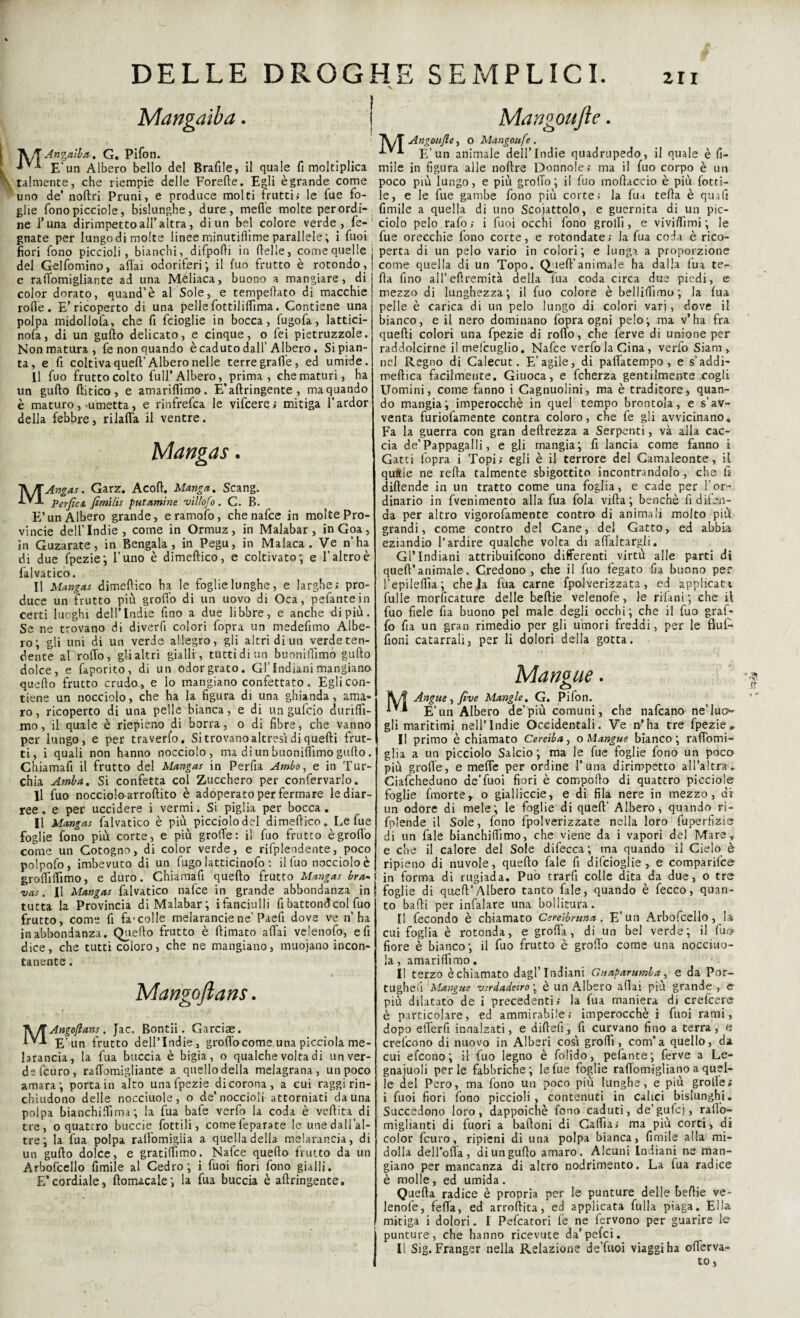 Angaìla-, G. Pifon. E'un Albero bello del Brafile, il quale fi moltiplica talmente, che riempie delle Forefte. Egli è grande come uno de’ noftri Pruni, e produce molti frutti; le fue fo¬ glie fonopicciole, bislunghe, dure, mede molte perori¬ ne l’una dirimpetto all’altra, di un bel colore verde, fe- gnate per lungo di molte linee minutifiime parallele ; i fuoi fiori fono piccioli, bianchi, difpodi in delle, come quelle del Gelfomino, affai odoriferi; il fuo frutto è rotondo, e raffomigliante ad una Meliaca, buono a mangiare, di color dorato, quand’è al Sole, e tempedato di macchie rode. E’ricoperto di una pellefottilidìma. Contiene una polpa midollofa, che fi fcioglie in bocca, fugofa, lattici- r.ofa, di un gudo delicato, e cinque, o fei pietruzzole. Non matura, fe non quando è caduto dall’Albero. Si pian¬ ta, e fi coltiva qued’Albero nelle terre grafìe, ed umide. Il fuo frutto colto full’ Albero, prima, che maturi, ha un gudo ditico, e amaridìmo. E’adringente , maquando è maturo,-umetta, e rinfrefca le vifcere; mitiga l’ardor della febbre, rilada il ventre. Mangas. \fiAngas. Garz. Acod. Manga, Scang. IVX perfìcA fimilis putamine vilìofo . C. B. E’un Albero grande, eramofo, che nafce in molte Pro¬ vincie dell’Indie, come in Ormuz, in Malabar, inGoa, in Guzarate, in Bengala, in Pegu, in Malaca . Ve n’ha di due fpezie; l’uno è dimedico, e coltivato; e l’altro è falvatico. Il Mangas dimedico ha le foglie lunghe, e larghe; pro¬ duce un frutto più grodo di un uovo di Oca, pefantein certi luoghi dell’Indie fino a due libbre, e anche di più. Se ne trovano di diverft colori fopra un medefimo Albe¬ ro; gli uni di un verde allegro, gli altri di un verde ten¬ dente al rodo, gli altri gialli, tutti di un buonidìmo gudo dolce, e faporito, di un odor grato. Gl'Indiani mangiano quedo frutto crudo,, e lo mangiano confettato. Egli con¬ tiene un nocciolo, che ha la figura di una ghianda, ama¬ ro, ricoperto di una pelle bianca, e di un gufcio duriffi- mo, il quale è riepieno di borra, o di fibre, che vanno per lungo, e per traverfo. Si trovano altresì di quedi frut¬ ti, i quali non hanno nocciolo, ma di un buonidìmo gudo. Chiamali il frutto del Mangas in Perda Ambo, e in Tur¬ chia Amba, Si confetta col Zucchero per confervarlo. Il fuo nocciole^rroftito è adoperato per fermare le diar¬ ree , e per uccidere i vermi. Si piglia per bocca. Il Mangas falvatico è più piccìolodel dimedico. Le fue foglie fono più corte, e più grotTe: il fuo frutto è grodo come un Cotogno, di color verde, e rifplendente, poco polpofo, imbevuto di un fugo latticinofo : il fuo nocciolo è grodiflìmo, e duro. Chiamad quedo frutto Mangas bra~ vas. Il Mangas falvatico nafce in grande abbondanza in tutta la Provincia di Malabar ; i fanciulli fi battond col fuo frutto, come fi fa-colle melarancie ne' Paed dove ve n’ha in abbondanza. Quedo frutto è dimato affai velenofo, e fi dice, che tutti coloro, che ne mangiano, muojano incon¬ tanente . Mangoflans. KRAngofians, Jac. Bontii. Garciae. E’un frutto dell’Indie, grodo come una picciola me¬ larancia, la fua buccia è bigia, o qualche volta di un ver¬ de fcuro, raffomigliante a quello della melagrana, un poco amara; porta in alto una fpezie di corona, a cui raggi rin¬ chiudono delle nocciuole, o de’noccioli attorniati da una polpa bianchidima ; la fua bafe verfo la coda è vedita di tre, o quattro buccie fiottili, comefeparate le unedall’al- tre ; la fua polpa radomigiia a quella della melarancia, di un gudo dolce, e gratiffimo. Nafce quedo frutto da un Arbofcello fumile al Cedro; i fuoi fiori fono gialli. E*cordiale, domacale; la fua buccia è adringente. Mangoufte. Angonfi e, o Mangoufe . E’un animale dell’Indie quadrupedo, il quale è li¬ mile in figura alle nodre Donnole; ma il fuo corpo è un poco più lungo, e più grodo ; il fuo modaccio è più fiotti¬ le, e le fue gambe fono più corte; la fua teda è quali fumile a quella di uno Scoiattolo, e guernita di un pic¬ ciolo pelo rafo; i fuoi occhi fono grodi, e vividìmi; le fue orecchie fono corte, e rotondate; la fua coda è rico¬ perta di un pelo vario in colori; e lunga a proporzione come quella di un Topo. Qued’animale ha dalla lua te¬ da fino all’edremità della fua coda circa due piedi, e mezzo di lunghezza; il fuo colore è bel liflnmo ; la fua pelle è carica di un pelo lungo di colori vari, dove il bianco, e il nero dominano fopra ogni pelo; ma v’ha fra quedi colori una fpezie di rodo, che ferve di unione per raddolcirne il mefcuglio. Nafce verfo la Gina, verfo Siam, nel Regno di Calecut. L’agile, di pad’atempo , e s’addi¬ medica facilmente. Giuoca, e fcherza gentilmente cogli Uomini, come fanno i Gagnuolini, ma è traditore, quan¬ do mangia; imperocché in quel tempo brontola, e s’av¬ venta furiofamente contra coloro, che fe gli avvicinano. Fa la guerra con gran dedrezza a Serpenti, và alla cac¬ cia de’Pappagalli, e gli mangia; fi lancia come fanno i Gatti fopra i Topi; egli è il terrore del Camaleonte, il qu&ie ne reda talmente sbigottito incontrandolo, che lì didende in un tratto come una foglia, e cade per l’or¬ dinario in fvenimento alla fua fola vida ; benché fi difen¬ da per altro vigorofamente contro di animali molto piu grandi, come contro del Cane, del Gatto, ed abbia eziandio l’ardire qualche volta di adaltargli. Gl’Indiani attribuifeono differenti virtù alle parti di qued’animale. Credono, che il fuo fegato fia buono per l’epiledia ; chela fua carne fpolverizzata, ed applicati Lulle morficature delle bedie velenofè, le rilani; che il fuo fiele fi a buono pel male degli occhi; che il fuo graf¬ fo fu un gran rimedio per gli umori freddi, per le fiuf- fioni catarrali, per li dolori della gotta. Mangile. Angue , five Mangle, G. Pifon. E’un Albero de’più comuni, che nafeano ne’Iuo- gli maritimi nell’Indie Occidentali. Ve n?ha tre fpezie„ Il primo è chiamato Cereiba, o M angue bianco; radomi- glia a un picciolo Salcio ; ma le fue foglie fono un poco più grode, e mede per ordine Luna dirimpetto all’altra. Ciafcheduno de’fuoi fiori è compodo di quattro picciole foglie fmorte, o gialliccie, e di fila nere in mezzo, ai un odore di mele; le foglie di qued’ Albero, quando ri- fp'ende il Sole, fono fpolverizzate nella loro fuperfizie di un fale bianchifiìmo, che viene da i vapori del Mare, e che il calore del Sole difecca; ma quando il Cielo è ripieno di nuvole, quedo fale fi difeioglie , e comparifce in forma di rugiada. Può trarfi colle dita da due, o tre foglie di qued’Albero tanto fale, quando è fecco, quan¬ to badi per infalare una bollitura. Il fecondo è chiamato Cereibruna. E’un Arbofcello, la cui foglia è rotonda, e grò da, di un bel verde; il fuo fiore è bianco; il fuo frutto è grodo come una nocciito- !a, amaridìmo. Il terzo èchiamato dagl’indiani Guaparumba, e da Por- tughe fi 'Mangue verdadeiro ; è un Albero adai più grande, e più dilatato de i precedenti; la fua maniera di crefcere è particolare, ed ammirabile; imperocché i fuoi rami, dopo efiferfi innalzati, e didefi, fi curvano fino a terra, e crefcono di nuovo in Alberi cosi grodi, com’ a quello, da cui efeono; il fuo legno è folido, pelante; ferve a Le¬ gnaiuoli per le fabbriche ; le fue foglie radomigliano a quel¬ le del Pero, ma fono un poco più lunghe, e più grolle; i fuoi fiori fono piccioli, contenuti in calici bislunghi. Succedono loro, dappoiché fono caduti, de’gufcj, radb- miglianti di fuori a badoni di Caffia; ma più corti, di color fcuro, ripieni di una polpa bianca, filmile alla mi¬ dolla del l’oda , di un gudo amaro. Alcuni Indiani ne man¬ giano per mancanza di altro nodrimento. La lua radice è molle, ed umida . Queda radice è propria per le punture delle bedie ve- lenofe, feda, ed arrodita, ed applicata fulla piaga. Ella mitiga i dolori. I Pefcatori fe ne fervono per guarire le punture, che hanno ricevute da’pefci. Il Sig. Franger nella Relazione de’fuoi viaggi ha offerva- to,