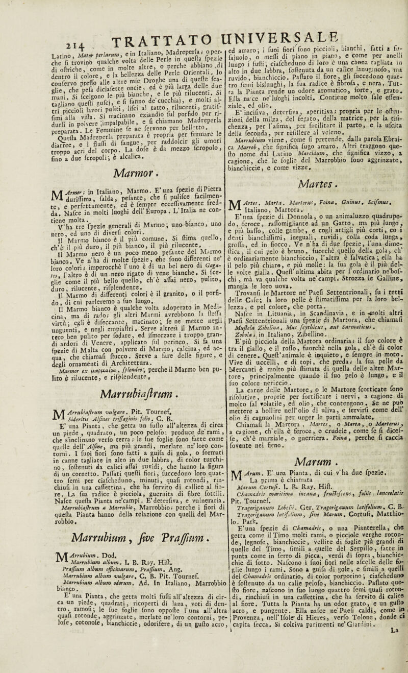 2 14 Latino, Mater perlarum, e in Italiano, Madreperla; oper* che fi trovino qualche volta delle Perle in quella fpeaie di oftrìche come in molte altre, o perche abbiano d. dent o il colore, e la bellona delle Perle Orientali. Io confervo preffo ille altre mie Droghe una di quefte fca- elie che pria diciafette oncie, ed e piu larga delle due nfnì si fcelgono le più bianche, e le più rilucenti Si tliano quelli gufici, e fi fanno decucchia,, e molti al- “f riccioli lavori puliti, iifci al tatto, rilucenti, grat.fi- fimiPal!a villa. Si macinano eziandio fui porfido per n- toli in polvere impalpabile, e fi chiamano Madreperla preparata. Le Femmine fé ne fervono per bel! tto. <wfta Madreperla preparata e propria P^r fer.mare [* diarree e i flutti di fangue, per raddolcir gli umori troppo acri del corpo. La dofe è da mezzo fcropolo, lino a due fcropoli; è alcalica. Marmor, ed amaro ; i fuoi fiori fono piccioli, bianchi, fatti a fu- fajuolo, o me (fi di piano in piano, e come per anelli lungo i furti-, ciafcheduno di loro è una canna ragliata in alto in due labbra, {ottenuta da un calice lanugioofo, mi ruvido, bianchiccio. Partalo il fiore, gli fuccedono quat¬ tro femi bislunghi, la fua radice è fibrofa, e nera. Tut¬ ta la Pianta rende un odore aromatico, forte, e grato. Ella na'ce ne’luoghi incolti,. Contiene molto fale effen- ziale, ed olio. E’incifiva, deterfiva , aperitiva; propria per le oflru- zioni della milza, del fegato, della matrice, per la tifi- chezza, per l’afimay per facilitare il parto, e la ufcita della feconda, per refi fiere al veleno. Marrubium viene, come fi pretende, dalla parola Ebrai¬ ca Marrob, phe lignifica fugo amaro. Altri traggono que¬ llo nome dal Latino Marcidum, che lignifica vizzo, a cagione, che le foglie del Marrobbro fono aggrinzate, bianchiccie, e come vizze. M Armon in Italiano, Marmo. E* una fpezie di Pietra du ritti ma, falda, pefante, che fi pulifce facilmen¬ te, e perfettamente, ed è Tempre eccellivamente tre da. Nafce in molti luoghi dell’Europa, L Italia ne con¬ tiene molta. ..- V’ha tre fpezie generali di Marmo; unabianco, uno nero, ed uno di diverti colori, I! Marmo bianco è il piu comune. Si fiima quello, eh’è il più duro, il più bianco, il più rilucente. Il Marmo nero è un poco meno pefante del Marmo bianco. Ve n’ha di molte fpezie, che fono differenti ne’ loro colori; imperocché l’uno è di un bel nero di Gasar ,est l’altro è di un nero rigato di vene bianche. Si te¬ glie come il più bello quello, eh'è affai nero, pulito, duro, rilucente, riattendente. . - Il Marmo di differenti colon e il granito, o il porh- do, di cui parleremo a fuo luogo, Il Marmo bianco è qualche volta adoperato in Medi¬ cina, ma di rado» gli altri Marmi avrebbono la (letta virtù; egli è difeccante, macinato; fe ne mette negli unguenti, e negli empiaftri, Serve altresì il Marmo in¬ tero ben pulito per fsdare, ed ifmorzare i troppo gran¬ di ardori di Venere, applicato fui perineo. Si fa una fpezie di Malta con polvere di Marmo, calcina, ed ac¬ qua , che chiamafi ftucco. Serve a fare delle figure, e degli ornamenti di Architettura. Marmar ex , fflendeo ; perche il Marmo ben pu¬ lito è rilucente, e rifplendente, Marrubiajlmm. MArrub'afìrum uulgare. Pit. Tournef, Sideritis Aìfmes triffagints folio. C. B. E’ una Pianta, che getta un fufio all’altezzsr di circa un piede , quadrato, un poco pelofo: produce de’rami, che s’inclinano verfo terra ; le fue foglie fono fatte come quelle delV Alfine t ma più grandi, merlate ne’loro con¬ torni. I Cupi fiori fono fatti a guifa di gola, o formati in canne tagliate in alto in due labbra, di color turchi¬ no, foftenuti da calici affai ruvidi, che hanno la figura di un cornetto. Pattati quelli fiori, fuccedono loro quat¬ tro femi per ciafcheduno, minuti, quafi rotondi, rin- chiufi in una caffettina, che ha fervito di caIlice al fio¬ re. La fua radice è picciola, guernita di fibre fiottili. Nafce quella Pianta ne’campi. E’deterfiva, e vulneraria. Marrubiaflrum a Marrubio, Marrobbio»- perche i fiori di quella Pianta hanno della relazione con quelli del Mar- robbio, Marrubium, five Vrajjium. A>T Arrubium. Dod. Marrubium album. I, B. Ray. Hill. Prajfìum album offìcinarum, Prajfium. Ang, Marrubium album vulgare, C. B. Pit. Tournef. Marrubium album odorum. Ad. In Italiano, Marrobbio bianco. E’ una Pianta, che getta molti furti all’altezza di cir¬ ca un piede, quadrati, ricoperti di lana, voti di den¬ tro, ramort; le fue foglie fono oppofte l’una all’altra quafi rotonde, aggrinzate, merlate ne’loro contorni, pe- lofe, cotonofe, bianchiccie, odorifere, di un gufto acro, Martes • MArtes. Marta. Matteria, Foina, Guinus, Sciftnus, Italiano, Martora. E’una fpezie di Donnola, o un animaluzzo quadrupe¬ de, feroce, rartomigliante ad un Gatto, ma più lungo, e più baffo, colle gambe, e cogli artigli più corti, co i denti bianchirmi, ineguali, ruvidi, colla coda lunga, grolla, ed in fiocco. Ve n’ha di due fpezie, luna diale¬ ttica , il cui pelo è bruno, fuorché quello della gola, eh’ è ordinariamente bianchiccio, l’altra è falvatica ; ella ha il pelo più chiare, e più molle: la fua gola è il più del¬ le volte gialla. Quell’ultima abita per l’ordinario ne’bof- chi , mà va qualche volta ne’campi. Strozza le Galline, mangia le loro uova, Trovanfi le Martore ne’ Paefi Settentrionali, fu i tetti delle Cafe; la loro pelle è rtimatiffima per la loro bel¬ lezza, e pel colore, che porta. Nafce in Lituania, in Scandinavia, e in-molti altri Paefi Settentrionali una fpezie di Martora, che chiamali Muftela Zibelina, Mas fcythicus, aut Sarmaticus. Zobola ». in Italiano, Zibellino. E’più picciola della Martora ordinaria» il fuo colore è tra il giallo, e il roffo, fuorché nella gola, eh’è di color di cenere. Quell’animale è inquieto, e Tempre in moto. Vive di uccelli, e di topi, che preda; la fua pelle da Mercanti è molto più (limata di quella delle altre Mar¬ tore , principalmente quando il fuo pelo è lungo, e il luo colore nericcio . La carne delle Martore, o le Martore fcorticate fono rifolutive, proprie per fortificare i nervi, a cagione di molto fai volatile, ed olio, che contengono. Se ne può mettere a bollire nell’olio di uliva, e fervirfi come dell’ olio di cagnuolini per unger le parti ammalate. Chiamafi la Martora , Martes , o Marta, .o Marterus , a cagione, ch’ella è feroce, e crudele, come fe fi dicef- fe, eh’è marziale, o guerriera. Foina, perche fi caccia fovente nel fieno. Marum . A/T Arum. E’ una Pianta, di cui v’ha due fpezie. La prima è chiamata Marum Cortufi. 1. B. Ray. Hift. Cham&dris maritima incanaì fructefcens, foliìs lanceolati Pit. Tournef. Tragoriganum Lobelìi. Ger. Tragoriganum latifolium. C. B- Tragorìganum latifolium y five Marum. Cortufi, Mattino¬ lo. Park. E’una fpezie di Cham&dris, o una Pianterella, che getta come il Timo molti rami, o picciole verghe roton¬ de, legnofe, bianchiccie, veftite di foglie più grandi di quelle del Timo, fimili a quelle del Serpillo, fatte in punita come in ferro di picca, verdi di fopra , bianchic- chie di fotto. Nafcono i Tuoi fiori nelle afcelle delle fo¬ glie lungo i rami. Sono a guifa di gole, e fimili a quelli del Cham&dris ordinario, di color porporino ; ciafcheduno è (ottenuto da un calie pelofo, bianchiccio. Pattato que¬ llo fiore, nafcono in fuo luogo quattro femi quafi roton¬ di, rinchiufi in una caffettina, che ha fervito di calice al fiore. Tutta la Pianta ha un odor grato, e un gurto acro, e pungente. Ella nafce ne’Paefi caldi, come in j Provenza , nell’ Ifolc' di Hieres, verfo Tolone, donde ci capita fecca. Si coltiva parimenti ne’ Giardini. i La
