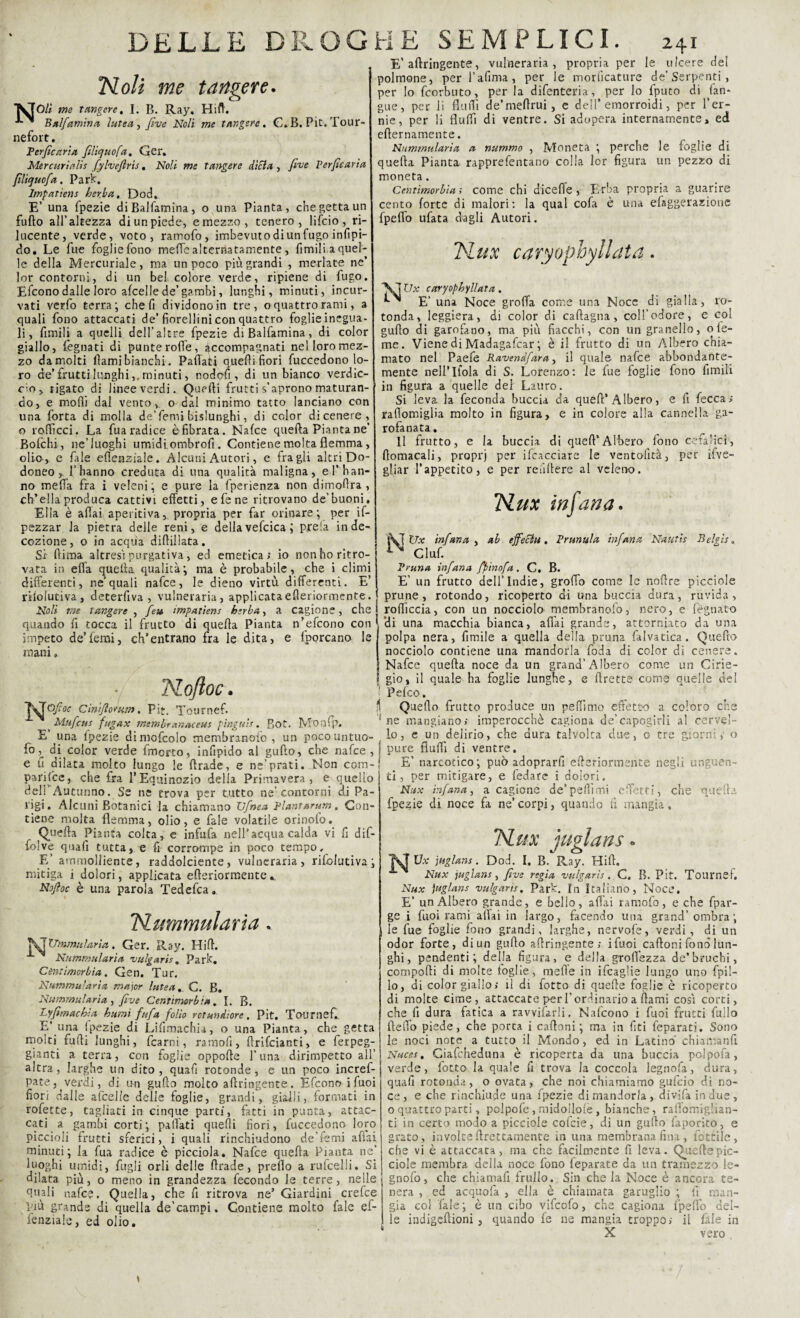 DELLE DROG Noli me tangere. Oli me tangere. I. B. Ray. Hill. Balfamina lutea, five Noli me tangere. C. B. Pit. Tour- nefort. Perficaria filiquofa. Ger. Mercuriali* fylvejlrts. Noli me tangere dieta , five Perficaria fil'tquofa. Park. Impatiens her.ba, Dod. E’ una fpezie di Balfamina, o una Pianta, che getta un furto all’altezza di un piede, e mezzo, tenero, lifeio , ri¬ lucente, verde, voto, ramofo, imbevuto di un fugo infipi- do. Le Tue foglie fono mefTc alternatamente, fimili.a quel¬ le della Mercuriale, ma un poco più grandi , merlate ne’ 3or contorni, di un bel colore verde, ripiene di fugo. Efcono dalle loro afcelle de’gambi, lunghi, minuti, incur¬ vati verfo terra; che fi dividono in tre, o quattro rami, a quali fono attaccati de’fiorellini con quattro foglie inegua¬ li, fimili a quelli dell’altre fpezie di Balfamina, di color giallo, legnati di punte rofie, accompagnati nel loro mez¬ zo da molti fami bianchi. Partati quelli fiori fuccedono lo¬ ro de’frutti lunghi,, minuti, nodofi, di un bianco verdic¬ cio, rigato di linee verdi. Quelli frutti s’aprono maturan¬ do, e molli dal vento,, o dal minimo tatto lanciano con una forta di molla de’femi bislunghi, di color dicenere, o roffìcci. La fuaradice èfibrata. Nalce quella Pianta ne’ Bofchi, ne’luoghi umidi ombrofi . Contiene molta flemma, olia, e fale efienziale. Alcuni Autori, e fra gli altri Do- doneo , l’hanno creduta di una qualità maligna, e l’han¬ no mefla fra i veleni, e pure la fperienza non dimoftra , ch’ella produca cattivi effetti, efene ritrovano de’buoni. Ella è aliai aperitiva,. propria per far orinare; per if- pezzar la pietra delle reni, e della vefcica ; prela in de¬ cozione, o in acqua diflilìata. Si liima altresì purgativa, ed emetica; io non ho ritro¬ vata in ella quella qualità; ma è probabile, che i climi differenti, ne’quali nafee, le dieno virtù differenti. E’ rifoiutiva, deterfiva , vulneraria, applicataefleriormente. Noli me tangere , feu impatiens barba, a cagione, che quando fi tocca il frutto di quella Pianta n’efcono con impeto de’femi, ch’entrano fra le dita, e fporcano le mani » TSLoftoc. ?\T©/?or C'miflorum. Pit. Tournef. Mufcus fugax tmmbrsinactus pingui*. Bot. Mo nfp. E’ una Ipezie dimofcolo membranenc , un pocountuo- fodi color verde fmorto, infipido al gufto, che nafee , e fi dilata molto lungo le Brade, e ne’prati.JSIon com- parifee, che fra l’Equinozio della Primavera, e quello deir Autunno. Se ne trova per tutto ne’contorni di Pa¬ rigi. Alcuni Botanici la chiamano Tjfnea Piantatura, Con¬ tiene molta flemma, olio, e fale volatile orinolo. Quella Pianta colta, e infufa nell’acqua calda vi fi dif- folve quali tutta, e fi corrompe in poco tempo. E’ ammolliente, raddolcente, vulneraria, rifoiutiva; mitiga i dolori, applicata efleriormente. Nofioc è una parola Tedefca. Nimmularia. jSJ UmmHÌaria. Ger. Ray. Hi A. Nummularia vulgarts. Park. Cèntìmorbìa. Gen. Tur. Nummularìa major lutea. C. B. Nummularia, five Cennmorbio. I. B. Lyfimachia burnì fifa folio rctundìore. Pit. Tournef. E’ una Ipezie di Lifimachia, o una Pianta, che getta molti fufli lunghi, fcarni, ramofi, ftrifeianti, e ferpeg- gianti a terra, con foglie opporte l’una dirimpetto all’ altra, larghe un dito, quali rotonde, e un poco incref- pate, verdi, di un gufto molto artringente. Efcono i fuoi fiori dalle afcelle delle foglie, grandi, gialli, formati in rofette, tagliati in cinque parti, fatti in punta, attac¬ cati a gambi corti; partati quelli fiori, fuccedono loro piccioli frutti sferici, i quali rinchiudono de’ìemi aliai minuti; la fua radice è picciola. Nafee quella Pianta ne’ luoghi umidi, figli orli delle ftrade, prerto a rufeelii. Si dilata più, o meno in grandezza fecondo le terre, nelle rtuali nafee. Quella, che fi ritrova ne’ Giardini crefce Viù grande di quella de’campi. Contiene molto fale ef- fenziale, ed olio. HE SEMPLICI. 241 E’artringente, vulneraria, propria per le ulcere del polmone, per l’afima, per le moriìcature de’Serpenti , per Io feorbuto, per la difenteria, per lo fputo di lin¬ gue, per li flurti de’mertrui, e dell’emorroidi, per fer¬ me, per li flulfi di ventre. Si adopera internamente, ed diurnamente. Nummularia a nummo , Moneta ; perche le foglie di quella Pianta rapprefentano colla lor figura un pezzo di moneta. Cèntìmorbìa ; come chi dicefie , Erba propria a guarire cento forte di malori: la qual cofa è una elaggerazione fpeflo ufata dagli Autori. Nux caryophyllata. AJ Ux caryophyllata. ^ E’ una Noce grolla come una Noce di gialla, ro¬ tonda, leggiera, di color di caftagna, coll’odore, e col gufto di garofano, ma più fiacchi, con un granello, ote¬ me. Viene di Madagafcar ; è il frutto di un Albero chia¬ mato nel Paefe Ravendfara, il quale nafee abbondante¬ mente nell’lfola di S. Lorenzo: le fue foglie fono fimili in figura a quelle del Lauro. Si leva la feconda buccia da quell’ Albero, e fi fecca; rafiomiglia molto in figura, e in colore alla cannella ga¬ rofanata. Il frutto, e la buccia di quell’Albero fono cefalici, ftomacali, proprj per ilcacciare le ventofità, per Sve¬ gliar l’appetito, e per rendere al veleno. Nux in fan a* NUx infuna , ab effecìu. Primula infuna Nauti* Belgis. Ciuf. Pruno, infuna fimo fa. C. B. E’ un frutto dell’Indie, groflo come le nortre picciole prune , rotondo, ricoperto ai una buccia dura, ruvida, roflìccia, con un nocciolo membranofo, nero, e legnato 'di una macchia bianca, aliai grande, attorniato da una polpa nera, Amile a quella della pruna falvatica. Quefto nocciolo contiene una mandorla foda di color di cenere. Nafee quella noce da un grand’Albero come un Cirie- gio, il quale ha foglie lunghe, e ftrette come quelle del Pefco. Quefto frutto produce un pefiimo effetto a coloro che ne mangiano; imperocché cagiona de’capogirli al cervel¬ lo, e un delirio, che dura talvolta due, o tre giorni, o pure fiuflì di ventre. E’ narcotico; può adoprarfi efleriormente negli unguen¬ ti, per mitigare, e fedare i dolori. Nux infuna, a cagione de’pelli mi effetti, che quella fpezie di noce fa ne’ corpi, quando fi mangia, Nux juglans » fj Ux juglans. Dod. I. B. Ray. Hill. i Nux juglans , five regia vulgati*. C. B. Pit. Tournsf. Nux juglans vulgati*. Park. In Italiano, Noce. E’ un Albero grande, e belio, affli ramolo, e che fpar- ge i fuoi rami aliai in largo, facendo una grand’ombra; le fue foglie fono grandi, larghe, nervofe, verdi , di un odor forte, di un gufto artringente; ifuoi cartoni fonò lun¬ ghi, pendenti; della figura, e della groftézza de’bruchi, comporti di molte toglie, mafie in ifeaglie lungo uno fpil- lo, di color giallo; il di fotto di quarte foglie è ricoperto di molte cime, attaccate per l’ordinario a rtami cosi corti, che fi dura fatica a ravvisarli. Nafcono i fuoi frutti fililo fterto piede, che porca i cartoni; ma in fiti feparati. Sono le noci note a tutto il Mondo, ed in Latino' chiamanfi Nuces. Ciafcheduna è ricoperta da una buccia pclpofa, verde, fotto la quale fi trova la coccola legnofa, dura, quafi rotonda, o ovata, che noi chiamiamo gufeio di no¬ ce, e che rinchiude una fpezie di mandorla, divifa in due, o quattro parti, polpofe, midollole, bianche, raflbmig'ian- ti in certo modo a picciole cofcie, di un gufto faporko, e grato, involte (Lettamente in una membrana fina, fiottile, che vi è attaccata, ma che facilmente fi leva. Quelle pic¬ ciole membra della noce fono feparate da un tramezzo le- gnofo, che chiamafi frullo. Sin che la Noce è ancora te¬ nera , ed acquofa , ella è chiamata garuglio ; fi man¬ gia col fale; è un cibo vifeofo, che cagiona fpelfio del¬ le indigertioni , quando fe ne mangia troppo; il fiale in X vero