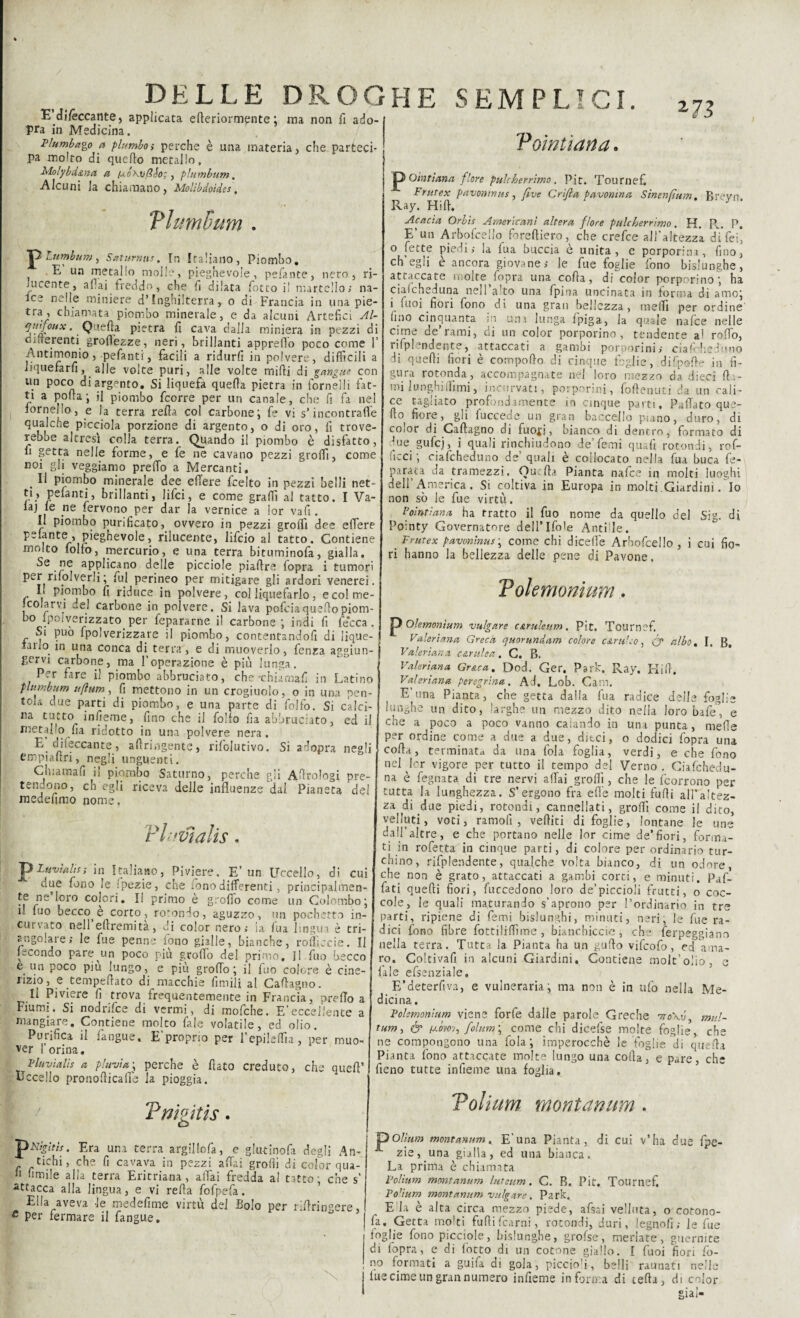 E dilèccante, applicata efteriormente ; ma non fi ado- pra in Medicina. Plumbago a plumboi perche è una materia, che parteci¬ pa molto di qucfto metallo, Molybd&na a fxó\ij/83o;, plumbum. Alcuni la chiamano, Molìbdoides. Tlumdum . T> lumbum, Saturnia, In Italiano, Piombo. t E un metallo molle, pieghevole, pelante, nero, ri¬ lucente, aliai freddo, che fi dilata Cotto il martello; na- lce nelle miniere d’Inghilterra, o di Francia in una pie- tra , chiamata piombo minerale, e da alcuni Artefici Al- quifoux. Quella pietra fi cava dalla miniera in pezzi di di'ferenti grofl'ezze, neri, brillanti appretto poco come F Antimonio, pefanti, facili a ridurli in polvere, difficili a liquefarli, alle volte puri, alle volte mirti di ganga? con un poco di argento. Si liquefa quella pietra in fornelli fat¬ ti a porta ; il piombo fcorre per un canale, che fi fa nel fornello, e la terra refta col carbone; fe vi s’incontrafle qualche picciola porzione di argento, o di oro, fi trove¬ rebbe altresì colla terra. Quando il piombo è disfatto, li getta nelle forme, e fe ne cavano pezzi groffi, come noi gli veggiamo prertb a Mercanti, . 11 piombo minerale dee edere fcelto in pezzi belli net- n, pelanti, brillanti, lifci, e come graffi al tatto. I Va- laj le ne fervono per dar la vernice a lor vafi. Il piombo purificato, ovvero in pezzi groffi dee edere pelante , pieghevole, rilucente, lifcio al tatto. Contiene molto folto, mercurio, e una terra bituminofa, gialla. Se ne applicano delle picciole piatire {opra i tumori per risolverli ; fui perineo per mitigare gli ardori venerei. Il piombo fi riduce in polvere, col liquefarlo, ecolme- i colar vi del carbone in polvere. Si lava pofcia querto piom- bo ipoìverizzato per fepararne il carbone; indi fi fe’cca. Si può fpolverizzare il piombo, contentandofi di lique¬ fano in una conca di terra, e di muoverlo, fenza aggiun¬ gervi carbone, ma l’operazione è più lunga. Per fare il piombo abbruciato, che-chiamali in Latino plumbum uflum, fi mettono in un crogiuolo, o in una pen¬ tola due parti di piombo, e una parte di folto. Si calci¬ na tutto infieme, fino che il folto fia abbruciato, ed ii metano fia ridotto in una polvere nera. E. di leccante, aftringente, rifolutivo. Si adopra negli empiartri, negli unguenti. Chiamati il piombo Saturno, perche gli Aftrologi pre¬ tendono, eh egli riceva delle influenze dal Pianeta del medefimo nome, Vluvìalis . jp Ltivìalis; in Italiano, Piviere. E’ un Uccello, di cui c.ue fono le fpezie, che fono differenti, principalmen¬ te ne loro colori. Il primo è grotto come un Colombo; i- tuo becco e corto, rotondo, aguzzo, un pochette in¬ cus vato nell eflremita, di color nero» la fua lingua è tri¬ angolare; le fue penne fono gialle, bianche, roticele. Il fecondo pare^un poco più grotto del primo. Il fuo becco e un poco piu lungo, e più grotto; il fuo colore è cine¬ rizio, e tempertato di macchie Umili al Cartagno. Il Piviere fi trova frequentemente in Francia, pretto a Fiumi. Si nodrifee di vermi, di mofehe. E’eccellente a mangiare. Contiene molto fate volatile, ed olio. Purifica il fangue. E’proprio per Fepileffia, per muo¬ ver 1 orina. Pluvialis a pluvia \ perche è fiato creduto, che quert’ Eccello prò notti catte la pioggia. HE SEMPLICI. %7Ì Vomitarla. Oìntiana flore puleberrimo. Pie. Tournef Frutex pavontnus, fìve Grifi a pavonma Sinenfìum, Breyn. Ray. Hirt. Acacia Orbìs Americani altera flore puleberrimo. H. R. P. E’un Arbofcetlo fbreftiero, che crefce all’altezza di Lei” o fette piedi; la tua buccia è unita, e porporina, fino, ch’egli è ancora giovane ; le fue foglie fono bislunghe, attaccate molte fopra una corta, di color porporino; ha ciatcheduna nell alto una fpina uncinata in forma di amo; i tuoi fiori fono di una gran bellezza, metti per ordine fino cinquanta in una lunga tpiga, la quale nafee nelle cime de’rami, di un color porporino, tendente a! rotto, rifpl ’ndente, attaccati a gambi porporini; Ciatcheduno di quefii fiori è comporto di cinque foglie, difpoffe in fi¬ gura rotonda, accompagnate nel loro mezzo da dieci Ita¬ mi lunghiffimi, incurvati, porporini, foftenuti da un cali¬ ce ragliato profondamente in cinque parti. Pattato que¬ rto fiore, gli Succede un gran baccello piano, duro, di coior di Cartagno di fuojj, bianco di dentro, formato di due gutcj, i quali rinchiudono de’Temi quali rotondi, rof- ficci ; ciafcheduno de’ quali è collocato nella fua buca fe- parata da tramezzi. Quitta Pianta nafee in molti luoghi dell’America. Si coltiva in Europa in molti .Giardini. Io non so le fue virtù. Poìntiana ha tratto il fuo nome da quello del Sig. di Pointy Governatore dell’Ifo'e Antifle. _ Frutex pavontnus ; come chi dicerte Arbofcello, i cui fio¬ ri hanno la bellezza delle pene di Pavone, Volemonium. Olemonìum vulgate c&ruleum . Pit. Tournef. Valeriana Greca quorundam colore cantico, (y albo, I. B, Valeriana cerulea. C. B. Valeriana Gr&ca. Dod. Ger. Park. Ray. Hirt. Valeriana peregrina. Ad, Lob. Cam. E’una Pianta, che getta dalla fua radice delle foglie lunghe un dito, larghe un mezzo dito nella loro bafe”, e cne a poco a poco vanno calando in una punta, mede per ordine come a due a due, ditei, o dodici fopra una corta, terminata da una fola foglia, verdi, e che fono neHor vigore per tutto il tempo del Verno. Ciafchedu- na è fegnata di tre nervi affai groffi, che le fcorrono per tutta la lunghezza. S’ergono fra erte molti furti all’altez¬ za di due piedi, rotondi, cannellati, groffi come ii dito, velluti, voti, ramofi , vertici di foglie, lontane le une dall’altre, e che portano nelle lor cime de’fiori, forma¬ ti in rofetta in cinque parti, di colore per ordinario tur¬ chino, rifplendente, qualche volta bianco, di un odore, che non è grato, attaccati a gambi corti, e minuti. Puf- fati quefti fiori, fuccedono loro de’piccioli frutti, o coc¬ cole, le quali maturando s’aprono per l’ordinario in tre parti, ripiene di Temi bislunghi, minati, neri, le fue ra¬ dici fono fibre fottiliffime , bianchiccio, che Serpeggiano nella terra. Tutta la Pianta ha un gurto vifeofo, ed ama¬ ro. Coltivafi in alcuni Giardini, Contiene molt’olio, e lale efsenziale» E’deterfiva, e vulneraria; ma non è in ufo nella Me¬ dicina. Volemonium viene forfè dalle parole Greche rno\v, mul- tum, & folum ; come chi dicefse molte foglie, che ne compongono una fola; imperocché le foglie di quella Pianta fono attaccate molte lungo una corta, e pare, che fieno tutte infieme una foglia. Vmgitis. • Era una terra argillofa, e glutinofa degli An- fichi, che fi cavava in pezzi affili grotti di color qua- 11 umile alia terra Eritriana, affai fredda al tatto; che s’ attacca alla lingua, e vi refta fofpefa. Ella aveva -le medefime virtù del Bolo per ritirin?ere, e per fermare il fangue. Tolium montanum . | jpOlìum montanum. E'una Pianta, di cui v’ha due fpe¬ zie, una gialla, ed una bianca. La prima è chiamata Volìum montanum luteum. C. B. Pit. Tournef. V olìum montanum vulgate. Park. E la è alta circa mezzo piede, afsai velluta, o corono- fa. Getta molti furti Scarni, rotondi, duri, legnofi; le fue toglie fono picciole, bislunghe, grofse, merlate, guernite di fopra, e di iotto di un cotone giallo. I tuoi fiori to¬ no formati a guifa di gola, piccio!i, belli raunati nelle | tue cime un gran numero infieme informa di tetta, di color