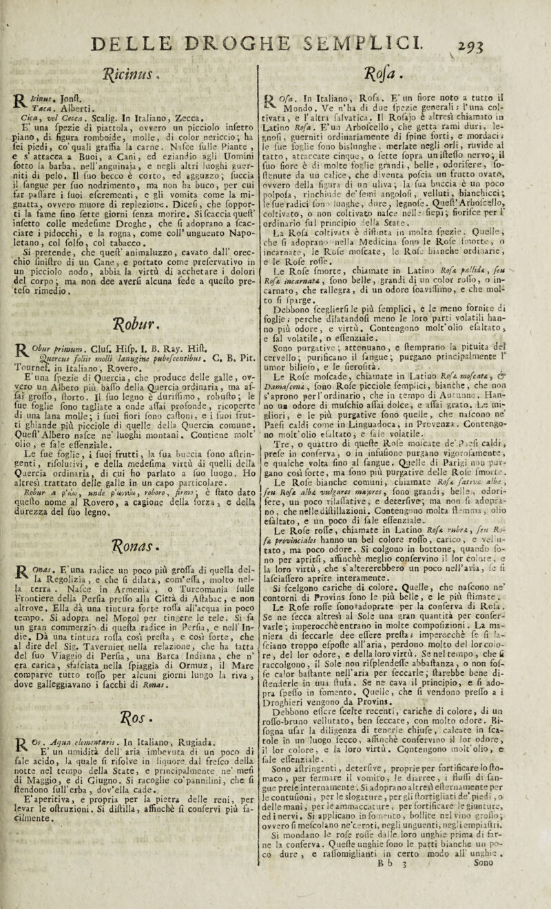 ’Rjcimts. lcinus, Jonft. Taca. Alberti. Cica, vel Cecca. Scalig. In Italiano, Zecca. E’ una fpezie di piattola, ovvero un picciolo infetto piano, di figura romboide, molle, di color nericcio; ha fei piedi, co’quali graffia la carne. Nafce fuIle Piante , e s’ attacca a Buoi, a Cani, ed eziandio agli Uomini fiotto la barba, nell’anguinaia, e negli altri luoghi guer- niti di pelo. Il fiuo becco è corto, ed ggguzzo; fiuccia il fiangue per fiuo nodrimento, ma non ha buco, per cui far pafl'are i fuoi efcrementi, e gli vomita come la mi¬ gnatta, ovvero muore di replezione. Dicefi, che {oppor¬ ti la fame fino fette giorni fenza morire. Sifcacciaqueft’ infetto colle medefime Droghe, che fi adoprano a (cac¬ ciare i pidocchi, e la rogna, come coll’unguento Napo¬ letano, col folfo, col tabacco. Si pretende, che queft’ animaluzzo, cavato dall’ orec¬ chio fìniftro di un Cane, e portato come prefiervativo in un picciolo nodo, abbia la virtù di acchetare i dolori del corpo ; ma non dee averfi alcuna fede a quefto pre- tefo rimedio. T^obur. R Obur prìmum. Clufi Hifp. I. B. Ray. Hift. Quercus follìs molli lanugine pubefcentìbus. C. B. Pit. Tournef. in Italiano, Rovero. E’una fpezie di Quercia, che produce delle galle, ov¬ vero un Albero più baffo della Quercia ordinaria, ma af¬ fai groflo, (torto. Il fuo legno è durilfimo, robufto; le fue foglie fono tagliate a onde affai profonde, ricoperte di una lana molle; i fuoi fiori fono cartoni, e i fuoi frut¬ ti ghiande più picciole di quelle della Quercia comune. Queft’Albero nafce ne’luoghi montani. Contiene molt’ olio , e fa le effenziale. Le fue foglie, i fuoi frutti, la fua buccia fono aftrin- genti, rifolurivi, e della medefima virtù ai quelli delta Quercia ordinaria, di cui ho parlato a fuo luogo. Ho altresì trattato delie galle in un capo particolare. Robur a p'clco, unde p comico, roboro, firmo', è fiato dato quefto nome al Rovero, a cagione della forza, e della durezza del fuo legno. T(onas. O Onas, E’una radice un poco più gro.ffa di quella del- la Regolizia , e che fi dilata, com’effa, molto nel¬ la terra . Nafce in Armenia , o Turcomania fulle Frontiere della Perfia prelfo alla Città di Aftabac, e non altrove. Ella dà una tintura forte rofta all’acqua in poco tempo. Si adopra nel Mogol per tingere le tele. Si fa un gran commerzio di quefta radice in Perita, e nell’In¬ die. Dà una tintura rolla cosi preda, e cosi forte, che al dire del Sig. Tavernier nella relazione, che ha fatta del fuo Viaggio di Perfia, una Barca Indiana, che n’ era carica, sfafeiata nella fpiaggia di Ormuz, il Mare comparve tutto roffo per alcuni giorni lungo la riva , dove galleggiavano i fiacchi di Ronas. Kos • * Os. Aqua elementari!. In Italiano, Rugiada. E’ un umidità dell’ aria imbevuta di un poco di l'ale acido, la quale fi rifolve in liquore dal frefeo della notte nel tempo della State, e principalmente ne’ mefi di Maggio, e di Giugno. Si racoglie co'pannilini, che fi (fendono full’erba, dov’ella cade. E’aperiti va, e propria per la pietra delle reni, per levar le oftruzioni. Si diftilla, affinchè fi confervi più fa¬ cilmente. 7(ofa. Ofa. In Italiano, Rofa. E’un fiore noto a tutto il Mondo. Ve n’ha di due fpezie generali ; l’una col¬ tivata, e l’altra falvatica. Il Rofajo è altresì chiamato in Latino Rofa. E’un Arbofcello , che getta rami duri, le¬ gnosi, guerniti ordinariamente di fpine forti, e mordaci.- le fue foglie fono bislunghe, merlate negli orli, ruvide al tatto, attaccate cinque, o fette fopra uniftefìo nervo; il fuo fiore è di molte foglie grandi , belle, odorifere, fo- rtenute da un calice, che diventa pofeia un frutto ovato, ovvero della figura di un uliva; la fua buccia è un poco po!po(a , rinchiude de’Temi angolofi, velluti, bianchicci; le fue radici fono lunghe, dure, legnofe. Queft’ Arbofcello, coltivato, o non coltivato nafce nelle fiepi; fiorifee per P ordinario fui principio della State. La Rofa coltivata è diftmta in molte fpezie. Quelle, che fi adoprano nella Medicina fono le Rofe {morte, o incarnate, le Rofe mofeate, le Rofe bianche ordinarie, e le Rofe rofle. Le Rofe fmorte, chiamate in Latino Rofa pallide., feu Rofe incarnata, fono belle, grandi di un color rollo, o in¬ carnato, che rallegra, di un odore foaviffimo, e che mol¬ to fi fparge. Debbono fceglierfi le più femplici, e le meno fornite di foglie ; perche dilatandofi meno le loro parti volatili han¬ no più odore, e virtù. Contengono molt’olio efaltato, e fai volatile, o effenziale. Sono purgative; attenuano, e {temprano la pituita del cervello; purificano il (àngue; purgano principalmente 1* umor biliofo, e le fierofità. Le Rofe mofeade, chiamate in Latiuo Rofa mofeata, & Damafcena, fono Rofe picciole femplici, bianche, che non s’aprono per l’ordinario, che in tempo di Autunno. Han¬ no ub odore di mufehio affai dolce, e affai grato. Le mi¬ gliori , e le più purgative fono quelle > che nafeono ne’ Paefi caldi come in Linguadoca, in Provenza. Contengo¬ no molt’olio «riattato, e (aie volatile. Tre, o quattro di quefte Rofe mofeate de’Paefi caldi, prefe in conferva, o in infufione purgano vigorofamente, e qualche volta fino al fangue. Quelle di Parigi non pur¬ gano cosi forte, ma fono più purgative delle Rofe fmorte. Le Rofe bianche comuni, chiamate Rofa fativa albe, feu Rofa alba vulgares ma)ores, fono grandi, belle, odori¬ fere, un poco rilaffative, e deterfive; ma non fi adopra¬ no, che nellediftillazioni. Contengono molta flemma, olio efàltato, e un poco di fale effenziale. Le Rofe roffe, chiamate in Latino Rofa rubra, fin Ri¬ fa provinciales hanno un bel colore roffo, carico, e vellu¬ tato, ma poco odore. Si colgono in bottone, quando fo¬ no per aprirfi, affinchè meglio confervino il lor colore , e la loro virtù, che s’altererebbero un poco nell’aria, fe fi lafciaffero aprire interamente. Si feelgono cariche di colore. Quelle, che nafeono ne’ contorni di Provins fono le più belle, e le più {limate. Le Rofe roffe fono»adoprate per la conferva di Rofa. Se ne Cecca altresì al Sole una gran quantità per confer- varle ; imperocché entrano in molte compofìzioni. La ma¬ niera di leccarle dee effere preda; imperocché fe fi la- feiano troppo efpofte all’aria, perdono molto del lor colo¬ re, del lor odore, e della loro virtù. Se nel tempo , cheti raccolgono, il Sole non rifplendeffe abbaftanza, o non fof- fe ca’or ballante nell’aria per feccarle; darebbe bene di¬ fenderle in uua flufa. Se ne cava il principio, e fi ado¬ pra fpeffo in fomento. Quelle, che fi vendono predo a i Droghieri vengono da Provins. Debbono effere feelte recenti, cariche di colore, di un roffo-bruno vellutato, ben feccate, con molto odore. Bi- fogna ufar la diligenza di tenerle chiufe, calcate in bea¬ tole in un luogo fecco, affinchè confervino il lor odore, il lor colore, e la loro virtù. Contengono molt’olio, e file effenziale. Sono aflringenti, deterfive, proprie per fortificare lo fto- maco , per fermare il vomito, le diarree, i flufii di fan¬ gue prefe internamente. Si adoprano altresìefternamente per le contufioni, per le slogature , per gli ffortigliati de’piedi, o delle mani, per le ammaccature, per fortificare le giunture, edinervi. Si applicano in fomento, bollite nel vino groflo; ovvero fi mefcolano ne’ceroti, negli unguenti, negliempiaftri. Si mondano le rofe roffe dalle loro unghie prima di far¬ ne la conferva. Quefte unghie fono le parti bianche un po¬ co dure , e raffomiglianti in certo modo all’ unghie .
