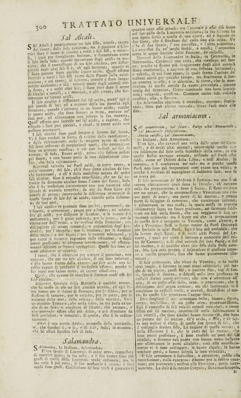 300 J eli Alcali • UN! VE RSALE C Al Alcali è propriamente un l'ale fitto , porofo, tratto S dal ranno, dalla Coda calcinata, ma e piaciuto a Ch - dal ranno, a aIcaIici a tutti i fall fitti, o volati- raia dare 11 n°m iianza bollon0j e fermentano come il’fale^ella^oda, quando incontrano degli acidi; in ma- r(ip il contrattegno di un tale aicalico, per di m nierV 5 ol, Alrri fa li fi è, eh’ egli fermenta, quando vi o tettato opra qualche liquor acido. Quel}* effetto fufc-de atutti i fiali fidi tratti dalle Piante colla calci- iucc.-v. < ranno ■ al filnitro, quando e flato lunga- nazione , e , volatili tratti dagli animali col- Tttorta molti altri fiali; è fiato pure dato il nome di alcalici a metalli, a i minerali, e alle pietre, c ^ e ’iftó alcalico°è differite dal fai acido, perch'egli è più porofo di lui; ed a ragione della lua PoroCta egh fermenta, quando s’incontra in un liquor acido, perche nunte acide, che fono fempre in moto, entrano ne furi pori, ed allontanano con isforzo la fina_ materia. Otieft’ effetto non fuccede nel lai acido, a cagione, che elTendo i fuoi pori piccioli, e chiufi, le punte acide non P°f°fàfi Cicalici ^ono quaf| fempre il lavoro del fuoco. Vi fi fono renduti in forma di calcina dalia rarefazione, e dalla calcinazione; onde la maggior parte di quelli fali fono imbevuti di corpicciuoh ignei, che comunicano loro un acrezza cauftica; e ciò può vederli ne fall d. tartaro di feda. Erano acidi, prima che follerò pattati pel fuoco, e non hanno prefa la loro oilpolizione alca- lica , che dalia calcinazione. Ritrovali talvolta ne’ Paefi caldi, in certe terre, o nelle miniere, del fiale, ch’è fiato fatto alcalico da fuo¬ chi fotterranei, e eh’ è della medefima natura de notiti fali alcalici. Non è eziandio impollinile, che un lai na¬ turale fia divenuto alcalico fenza l'aiuto del fuoco; balta che fi fia mefcolato intimamente con una quantità aliai -rande di materia terreftre, da cui fu fiato fatto pm porofo di prima; imperocché la diflerenza principale di quella fpezie di fiale dal fai acido, coniifte nella differen¬ za de’fuoi pori. ..... I fiali alcalici in generale fono incitivi, penetranti, ra¬ rificanti, o attenuanti, propri per afforbire, ed indebo¬ lire gli acidi, per dittpare le ficrofole, e le ccccie d fi mefienterio, per li gozzi nafeenti, per la pietra, per la ritenzione dell’ orina , e de’ mefirui delle Femmine , per difeiogliere gli umori tartaroii, o meiancolici degl’ Ipo¬ condri, per l’idropifia , per la itterizia, per le durezze della milza, e del fegato, per li tumori edematofi , e per tutte le malattie cagionate dalle oftruzioni, o dagli umori groffolani. Si adoprano internamente, ed efterna- mente difciolti in liquori appropriati. Quelli fiali fono al¬ tresì adoperati ne’cauteri. I ranni, che fi adoprano per nettare il pannolino, non operano, che per un lale alcalico, di cui fono imbevuti, e che hanno tratto dalla cenere; un fale acido non fa¬ rebbe capace di produrre il medefimo effetto; perche le fue parti non hanno moto, nè azione abbafianza. Qjelli, che cavano le macchie fi fervono anch’ ett del fale alcalico. Seignette Speziale della Roccella è qualche tempo, che ha metto in ufo un fale alcalico nitrolo, eh’ egli fili- ma buono per li dolori di ftomaco, per le febbri, per le fìuttoni di catarro, per le coliche, per le gotte, per le malattie delle reni, della veficica, della matrice. Vedi un picciolo Trattalo,^che nella fatto, in cui parla ezian¬ dio di un fiale, o zucchero di Marte, che prepara, e •che pretende edere affai più dolce, e più depurato da fo'fì groffolani, e metallici, di quello, che fi fa ordina¬ riamente . quattro ugne affai grandi; ma 1 animale e affai piu lento n-I fuo palio della Lucertola ordinaria; la lua fchiena ha una figura limile a quella di una croce, ed e legnato da due linee, che fi ftendono dal collo fino alla coda. Ve n’ha di due fpezie, 1’una terreftre, e l’altra acquatica, La terreftre Ila ne’ luoghi freddi, e umidi; 1 acquatica cerca le acque limpide delle Fontane, de rulcelli. . Trovanfi delle Salamandre in Italia, in Germania, in Normandia. Credeva!! una volta, che vivefiero nel fuo¬ co, perche vi Hanno più lungamente degli altri animali fenza conlumarfi, a cagione di una fofianza latticinola, e vifeofi, di cui fono piene, la quale feema l’ardore de carboni accefi per qualche tempo, ma finalmente il tuo- co penetra in effe, e le abbrucia. Si tiene, che la mor- ficatura di quello rettile fia tanto pericolola , quanto quella del Serpente. Getta mordendo una bava latticf- nofa, velenofa, acrili! ma. Contiene molto lale volatile cauftico, olio, e flemma. La Salamandra applicata è corrofiva, cocente, depila¬ toria. Non può alcuno toccarla, fenza farfi male alle dita. Sai armoniacum . Mercuriali! , Aìkali è una parola Araba, comporta della particella, */, che lignifica il, o la, e di Kali, loda; in maniera, che fai aitali fignifica fale di foda. Salamandra. 43 Ala. munir a. In Italiano, Salamandra. E una fpezie di Lucertola di color nero, tempeftata di macchie gialle; la fiua teda, e il fuo ventre fono più grofft ai quelli della Lucertola verde ordinaria; ma la ina coda e piu corta. U iuo mortacelo è acuto; i tuoi occhi tono grofli. Ciafcheduno de’fuoi piedi C Al armoniacum . Sai folare . Fuligo alba ^ Sai Mercurialis pbilofophorum. Aquila cceleftis. Sai Ammoni ac um . In Italiano, Sale Armoniaco. E’un fale, che cavavafi una volta dalle orine de’Cam¬ melli, e di molti altri animali; imperocché quello fale era fublimato dal Sole nella fuperfizie della rena, in cui quelle Befiie avevano orinato, pallando ne Paefi affai caldi, come ne’ Diferti della Libia, e nell’ Arabia. Si raunava, e fi confervava ne’vafi; ma o perche quelli Paefi non fono più frequentati confi erano una volta; o perche fi trafeuri di raccogliere il fuddetto lale, non fe ne porta più. ... V Il fale armoniaco de’Moderni è fattizio; ma non li sa ancora piattamente quali fieno le Droghe, ch entrano nella fua preparazione, e dove fi faccia. E’(lato creduto per un pezzo, che lo componeffero i Veneziani con cin¬ que parti di orine, una parte di fai marino,- e mezza parte di fuliggine di cammino, che cuocevano infieme, e riducevano in una malia, la quale metta in pentole fiublimatorie fopra un fuoco graduato, me facevano fubli- ivare un fale nella forma, che noi veggiamo il fale ar¬ moniaco ordinario: ma fi feppe poi che la preparazione di quello fa!e è incognita in Venezia, come altrove, e che i Veneziani (ledi lo fanno venire da^ Paefi Orientali per fpedirlo in altri Paefi. Egli è ben più probabile, che fia lavoro degli Egizi, e di molti altri Popoli del Le¬ vante, i quali per virtù fi fervono a comporlo deli ori¬ na de’Cammelli, 0 di altri animali del loro Paefe, e del fai marino, o di qualche altro l'ale fitto della (letta natu¬ ra. Ma farà cofa propria il fofpendere il giudizio intor¬ no a quello proposito, fino che fiamo pienamente illu¬ minati . t Il fale armoniaco, che viene da Venezia, e da molti altri luoghi, è formato in pani piani orbicolari, più lar¬ ghi di un piatto, grotti tre, 0 quattro dita, bigi di fuo¬ ri, bianchi di dentro, e difpofti nella loro grettezza iti enfiarti diritti come colonne; che non s umettano all’ aria, di un gufio affai fallo, acro, e penetrante, che fi difciolgono nell acqua comune, ma che facilmente vi fi coagulano in criftalSi molli, e nervofi , freddittmi al tat¬ to. In queflo l'ale penetrano Tacque forti. Dee fceglierfi i! tale armoniaco belio, bianco, fecco, netto, criftallino, di un gufio acro, penetrantittmo. Egli è comporto di fali volatili orinofi mefcolati, e come fittati col fai marino, imperocché nella fublimazione i fali volatili, che fono alcalici hanno levato ciò, che h^n- no potuto del fai marino, ch’è acido, e frtlo, e se lat¬ ta una unione sì efatta di quelle due fpezie di fali, che il mefcuglio fembra fitto. La ragione di quella unione, e della filiazione fi è, che le parti del fai marino, ^che fono punte groffolane , fi fono confufe ne’ pori de’ fali alcalici, e ficcome tali punte non hanno moto ballante per allontanare le parti alcaliche, così ette necettaria- mente vi fi fono avillupate, le hanno chiufe, le hanno rendute grevi, o hanno fofpefa la loro volatilità. Il lale armoniaco è fudorifico, e aperitivo; refiffe alla putrefazione, ealla cancrena; è buono per la febbre quar-, acuto; 1 ìuoi t tana; per provocare i mefirui alle Femmine, preio inter- i è guernitodi Inamente, La dote è da mezzo fcropolo, finoauaofcropolo. 1 Si