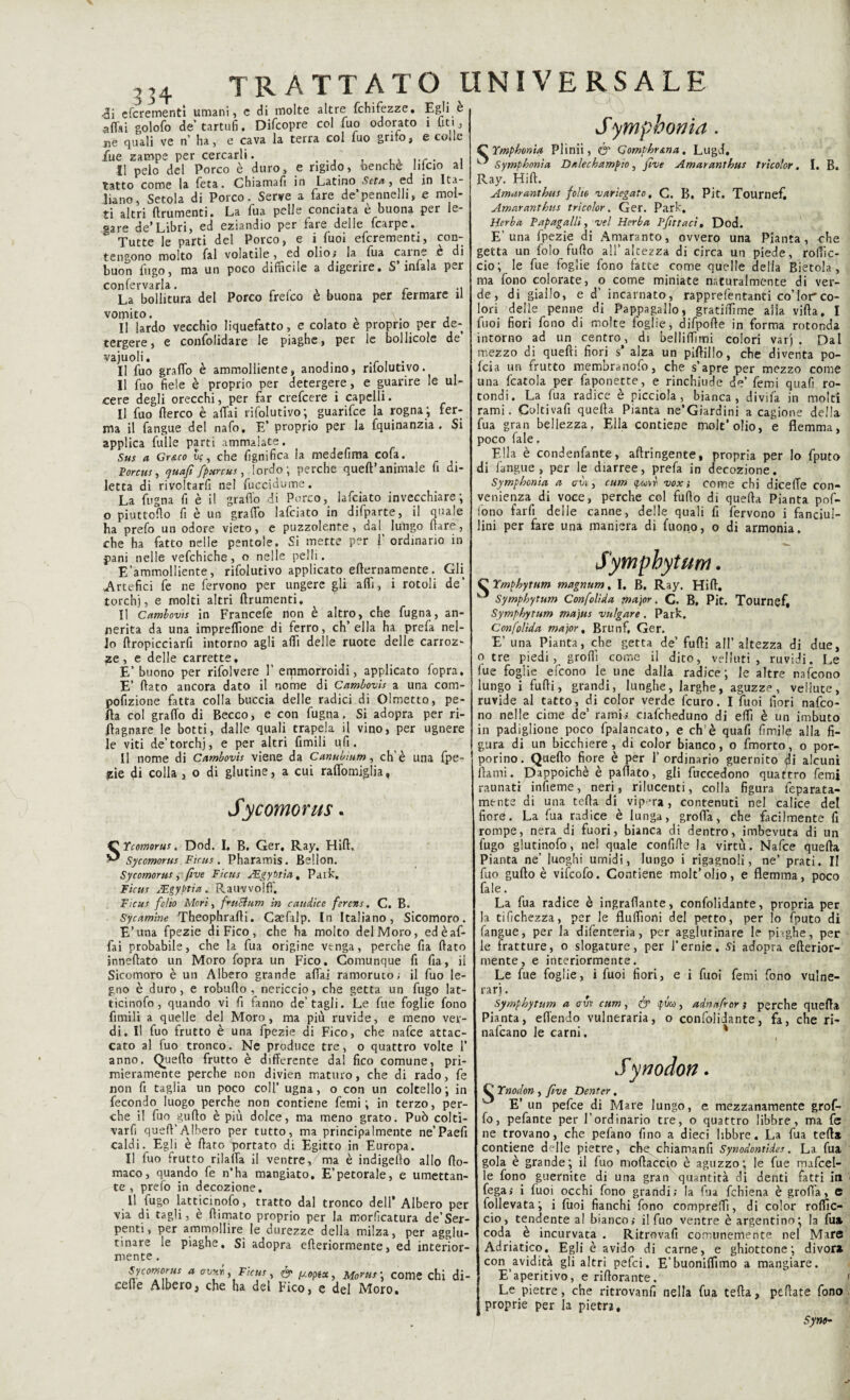 <ii cfcrementì umani, e di molte altre fchifezze. Egli è affai golofo de tartufi. Difcopre col fuo odorato i (iti, ne quali ve n ha, e cava la terra col fuo griffi, e colle iue zampe per cercarli. . ... , ,, . . 11 pelo del Porco è duro, e rigido, benché liicio al tatto come la feta. Chiamafi in Latino Seta, ed in Ita¬ liano, Setola di Porco. Serve a fare de’pennelli, e mol- ti altri ftrumenti. La Tua pelle conciata e buona per le- gare de’Libri, ed eziandio per fare delle fcarpe. Tutte le parti del Porco, e i fuoi eferementi, con- tengono molto fai volatile 5 ed olio; la fua calne e di buon fugo, ma un poco difficile a digerire. S’infala per confervarla. r .. La bollitura del Porco frelco e buona per termare ri vomito. N . , Il lardo vecchio liquefatto, e colato e proprio per de¬ tergere, e confolidare le piaghe, per le boilicole de vajuoli. 4 Il fuo graffo è ammolliente, anodino, rilolutivo. Il fuo fiele è proprio per detergere, e guarire le ul¬ cere degli orecchi, per far crefcere i capelli. Il fuo Aereo è affai rifolutivo; guarifee la rogna; fer¬ ma il fangue de! nafo. E’ proprio per la fquinanzia . Si applica Tulle parti ammalate. Sus a Gr&co Se, che fignifica la medefima cofa. Porcus, quafi fpunus, lordo; perche queft’animale fi di¬ letta di rivoltarli nel fuccidume. La fogna fi è il graffo di Porco, lafciato invecchiare ; o piuttofio fi è un graffo lafciato in difparte, il quale ha prefo un odore vieto, e puzzolente, dal lungo (lare, che ha fatto nelle pentole. Si mette per f ordinario in pani nelle vefchiche, o nelle pelli. E’ammolliente, rifolutivo applicato efternamente. Gli Artefici fe ne fervono per ungere gli affi, i rotoli de' torchi, e molti altri ftrumenti. Il Cambovis in Francefe non è altro, che fugna, an¬ nerita da una impreflione di ferro, ch’ella ha prefa nel¬ lo ftropicciarfi intorno agli affi delle ruote delle carroz¬ ze, e delle carrette, E’ buono per rifolvere 1’ erpmorroidi, applicato fopra, E’ fiato ancora dato il nome di Cambovis a una com- pofizione fatta colla buccia delle radici di Olmetto, pe- fia col graffo di Becco, e con fugna. Si adopra per ri- fiagnare le botti, dalle quali trapela il vino, per ugnere le viti de’torchi, e per altri fimili ufi. Il nome di Cambovis viene da Canubium, eh'è una fpe- jffe di colla , o di glutine, a cui raffomiglia, Sycomorus. SYcomorus. Dod. I. B. Ger, Ray. Hiff, Sycomorus Finis . Phararnis. Bellon. Sycomorus , fi ve Ficus ASgybtìa, Park. Ficus ALgyptìa. Rauvvolff. Ficus folio Mori, fin cium in caudice ferens, C. B. Sycamine Theophrafti. Csefalp. In Italiano, Sicomoro. E’una fpezie di Fico , che ha molto del Moro, ed è af¬ fai probabile, che la fua origine venga, perche fia fiato inneftato un Moro fopra un Fico. Comunque fi fia, il Sicomoro è un Albero grande affai ramoruto; il fuo le¬ gno è duro, e robufio , nericcio, che getta un fugo lat- ticinofo , quando vi fi fanno de’tagli. Le Tue foglie fono fimili a quelle del Moro, ma più ruvide, e meno ver¬ di. Il fuo frutto è una fpezie di Fico, che nafee attac¬ cato al fuo tronco. Ne produce tre, o quattro volte 1’ anno. Quello frutto è differente dal fico comune, pri¬ mieramente perche non divien maturo, che di rado, fe non fi taglia un poco coll’ ugna, o con un coltello; in fecondo luogo perche non contiene femi ; in terzo, per¬ che il fuo gufto è più dolce, ma meno grato. Può coltì- varfi quell’Albero per tutto, ma principalmente ne’Paefi caldi. Egli è fiato portato di Egitto in Europa. Il fuo frutto rilaffa il ventre, ma è indigefio allo fio- maco, quando fe n’ha mangiato. E’perorale, e umettan¬ te, prefo in decozione. Il fugo latticinofo, tratto dal tronco dell’ Albero per via di tagli, è filmato proprio per la morficatura de’Ser¬ penti, per ammollire le durezze della milza, per agglu¬ tinare le piaghe. Si adopra elleriormente, ed interior¬ mente . Sycomorus a aoxti, Ficus, ér> (J.optu, Morus\ come chi di- cefie Albero, che ha del Fico, e del Moro. Aio Symphouia. C Ymphonia Plinii, & Qomphr&na, Lugcf, Symphonia Dalechampio, five Amaranthus tricolor. I. B. Ray. Hi fi. Amaranthus folto variegato, C. R. Pit. Tournefl Amaranthus tricolor. Ger. Park. Herba Papagalli, ve! Herba Pfìttaci, Dod. E’una fpezie di Amaranto, ovvero una Pianta, che getta un folo fufio all’altezza di circa un piede, roffic- cio; le fue foglie fono fatte come quelle delia Bietola, ma fono colorate, o come miniate naturalmente di ver¬ de, di giallo, e d’ incarnato, rapprefentanti co’lorco¬ lori delle penne di Pappagallo, gratiffime alla vifta. I fuoi fiori fono di molte foglie, difpofie in forma rotonda intorno ad un centro, di belliffimi colori vari. Dal mezzo di quelli fiori s’ alza un pifiillo, che diventa po- feia un frutto membranofo, che s’apre per mezzo come una fcatola per faponette, e rinchiude de’ femi quafi ro¬ tondi. La fua radice è picciola , bianca, divifa in molti rami. Coltivafi quella Pianta ne’Giardini a cagione della fua gran bellezza, Ella contiene molt’olio, e flemma, poco fale. Ella è condenfante, aftringente, propria per Io fputo di fangue, per le diarree, prefa in decozione. Symphonia a <m, cum pmr. vox; come chi diceffe con¬ venienza di voce, perche col fufio di quella Pianta pof- ffino farfi delle canne, delle quali fi fervono i fanciui- lini per fare una maniera di Tuono, o di armonia. Symphytum. C Ymphytum magnum, I. B. Ray. Hifi. J Symphytum Confolida major. C. B. Pit. Tournef, Symphyrum majus vuìgare. Park. Confolida major, Brunf, Ger. E’ una Pianta, che getta de’ fufii all’altezza di due, otre piedi, groffi come il dito, velluti, ruvidi. Le (ue foglie efeono le une dalla radice; le altre nafeono lungo i fufii, grandi, lunghe, larghe, aguzze, vellute, ruvide al tatto, di color verde feuro. I fuoi fiori nafeo¬ no nelle cime de’ rami» ciafcheduno di effi è un imbuto in padiglione poco fpalancato, e eh'è quafi fimiffi alla fi¬ gura di un bicchiere, di color bianco, o fmorto, o por¬ porino. Quello fiore è per l’ordinario guernito di alcuni fiami. Dappoiché è paflato, gli fuccedono quattro femi raunati infieme, neri, rilucenti, colla figura l'epa rata¬ mente di una tefta di^ vipera, contenuti nel calice del fiore. La fua radice è lunga, grolla, che facilmente fi rompe, nera di fuori, bianca di dentro, imbevuta di un fugo glutinofo, ne! quale confifie la virtù. Nafee quella Pianta ne’ luoghi umidi, lungo i rigagnoli, ne’ prati. Il fuo gufto è vifeofo. Contiene molt’olio, e flemma, poco fate. La fua radice è ingrafiante, confolidante, propria per la tifichezza, per le fluffioni del petto, per lo fputo di fangue, per la difenteria, per agglutinare le piaghe, per le fratture, o slogature, per l’ernie. si adopra efterior- mente, e interiormente. Le fue foglie, i fuoi fiori, e i fuoi femi fono vulne¬ rari . Symphytum a am cum, (°p pòco, adnafror ; perche quella Pianta, effendo vulneraria, o confolidante, fa, che ri- nafeano le carni. ' Synodon . fdYnodon , five Dentcr, E’ un pefee di Mare lungo, e mezzanamente grof- fo, pefante per l’ordinario tre, o quattro libbre, ma fe ne trovano, che pefano fino a dieci libbre. La fua tefta contiene delle pietre, che chiamanfi Synodontides. La fua gola è grande; il fuo mollacelo è aguzzo; le fue mafcel- le fono guernite di una gran quantità di denti fatti in Tega,- i fuoi occhi fono grandi; la fua fchiena è grolla, e follevata; i fuoi fianchi fono compreffi, di color roffìc- cio, tendente a! bianco; il fuo ventre è argentino; la fua coda è incurvata . Ritrovafi comunemente nel Mare Adriatico. Egli è avido di carne, e ghiottone; divora con avidità gli altri pefei. E’buonilftmo a mangiare. E’aperitivo, e rifiorante. Ì Le pietre, che ritrovanfi nella fua tefta, peliate fono proprie per la pietra, Sym-