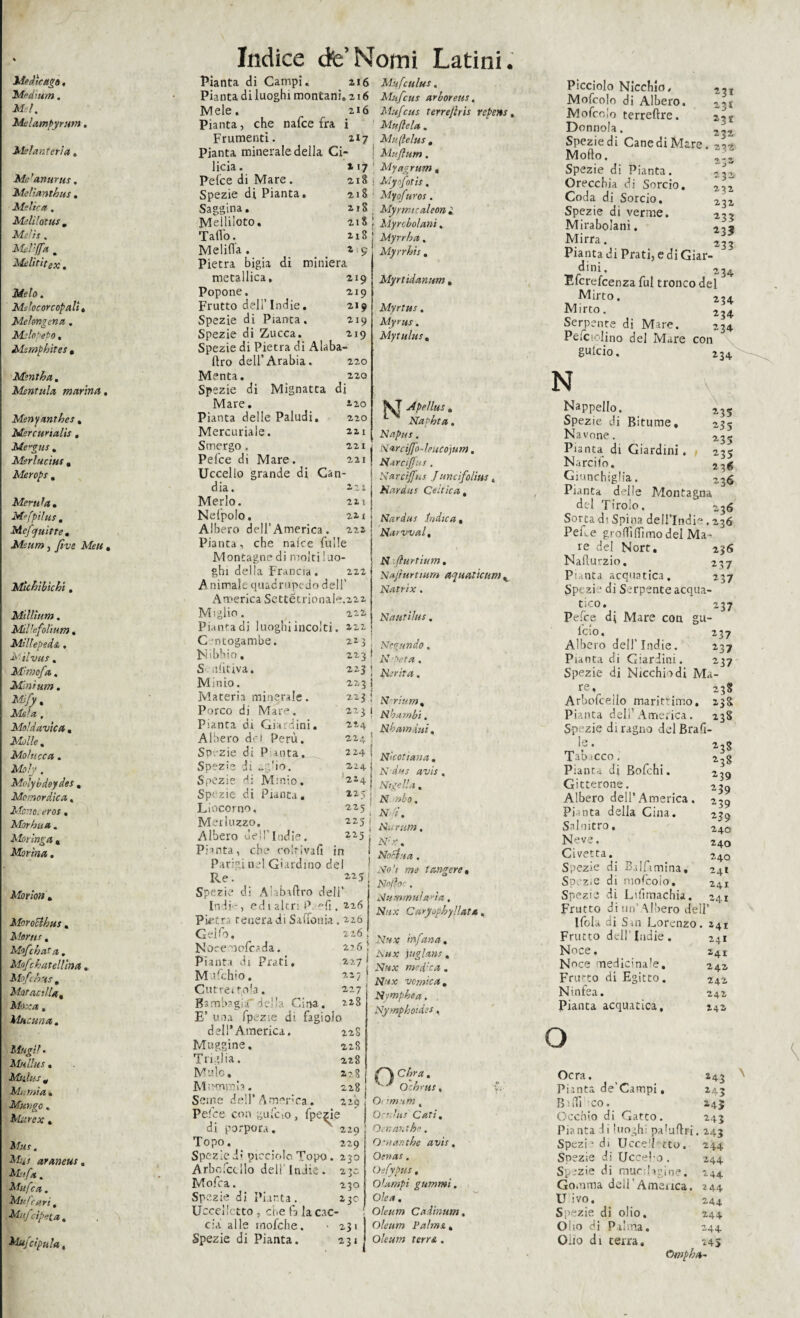 Medie ago, Medium. Mei. Melampyrum. Me fanteria. Me'anurus. Meliantbus. Melica , Melìlotus „ Melis . Mel'Jfa . Melititex. Melo. Mslocorcopali, Melongena. Mio ‘ebo. Msmpbites . Mentba. Mentala marina. Menymthes , Mercuriali , Mevgus , Merlucius . Merops . Menila, MefptluS . Mefquitte, Msum , fìve Meu , Mìchìbìchi , Millìum. Mìllefolium. Millepeda . M'tlvus % Mmofa. Mlnium. Mify, Mela , Moldavi a, Molle. Molti cca. 2V£i>//, Molybdeydes . Momordica, Mono, eros. Morhua . Morìnga , Marina. Marion . Moro&hus , Morti s . Mofcbat a. Mofchatellìna. Mofi bus . Matacilla, Mosca, Mucuna, Mugli • Mullus, Mulus m Marnia» Mungo . Murex, Mas, Mia araneus , Mi fa. Mitfca. Muf cari # ■&£;/:ipeia. Mufcipula, Indice de’Nomi Latini. Pianta di Campi. zi6 Mufculus. Pianta di luoghi montani» 216 Mufcus arboretis, Mele. 216 Mufcus terreflris repens, Pianta, che nafee fra i Muftela. Frumenti. Uq Muftelus. Pianta minerale della Ci- 1 Muflutn. licia. Pelce di Mare. 2185 21S Myofitros. 2.13 Myrmicaleon ± 21S | Myrcbolani. 218 Myrrba. *9’ *17 My a/i rum Spezie di Pianta. Saggina. Melliloto. Tatto. Melitta . Pietra bigia di miniera metallica. 219 Popone. 219 Frutto dell’Indie. 219 Spezie di Pianta. 219 Spezie di Zucca. 219 Spezie di Pietra di Alaba- ftro dell’Arabia. 220 Menta. 2,2,0 Spezie di Mignatta di Mare. *2,0 Pianta delle Paludi. 220 Mercuriale. 22.1 Smergo. 221 Pelce di Mare. 2,21 Uccello grande di Can- dia. 2,21 Merlo. 211 NefpoJo. 22-t Albero dell’America. 222 Pianta, che naice filile Montagne di molti luo¬ ghi della Francia. 222 A ninnale quadrupede dell’ America Settétrionale.222 Miglio. 222 Pianta di luoghi incolti. 2,22 223 223 / i «vofotis. Myirbis. Myrtidanum . Myrtus. Myrus. Mytulus . C -ntogambe. Nibbio. S ulitiva. Minio. Materia minerale. Porco di Mar^. Pianta di Giardini. Albero dei Perù. Spezie di Pianta. Spezie di io. Spezie di Minio. Spezie di Pianta, Liocorno, Merluzzo. Albero dell’Indie. Pianta, che coltivali in Parigine! Giardino del Re Spezie di Alabaftro dell’ Indi-, ed 1 altri P. fi. 226 Pietra tenera di Salfouia . 226 Gelfo. 226! Nocemofcada. 226 Pianta di Prati, 227 Mifchio. 227 Cutrett^ola. 227 Bambagiadella Cina. 228 E’ una fpezie di fagiolo dell’America. Muggine. Triglia. Mulo. M;>mrnia. Seme dell’America. 229 Pelce con gufcio, fpezie di porpora. ^ 229 Topo. 229 Spezici'4 picciolo Topo. 230 Arbofcdlo dell’ Indie. 230 Mofca. 230 Spezie di Pianta. 230 Uccelletto , che fa la cac¬ cia alle rnofche. • 231 Spezie di Pianta. 231 fSj4 Apellus , *■ Napbta. Napus. Piarcijfo-leucojum. N-irciffus . Narcìjfus Juncìfolius. Hard,us Celtica, Nardtis Indica, Narvval, N -.(lurtium, Najrurtium aqu atte uni % Natrix . Naurilus. Nct/undo» N ■ ‘'era. ; Merita. 223 i 3 ! iY rium, “3 j Nharnbi. , Nbatndui, 224 ! 22,4 j Nicoziana, z“4 ' Ndus avis « 224 ^ Nigella, l25 Nmbo. 225.' Nfs, 225 i i Nurum. Z25| N;x . j Nodiu a . ^ , 1 No ’t me tangere. 5 Nofloc. Au cumula 'da, Nnx Curyopbyllat* , Nhx infama, j isitx ìuglans. 1 Nux media. \ Nux vomica, Nympbea, , Ny mpboides, 22S 228 228 2? 8 228 j fA Cbra, Ochrus. Oi imam, Oc?bus Catì, Oenantho . Oman thè avis. Oenas . Oefypus. Olampi gammi. Olea. Oleum Cadintim, Oleum Palmi » Oleum terra . Picciolo Nicchio, 2,T Mofcolo di Albero. 2gi Mofcolo terreftre. Donnola. Spezie di Cane di Marc. Motto. Spezie di Pianta. Orecchia di Sorcio. Coda di Sorcio, Spezie di verme. Mirabolani. Mirra. Pianta di Prati, e di Giar- dini. 234 Efcrefcenza fui tronco del Mirto, 234 Mirto, Serpente di Mare. 234 Pentolino del Mare con gUlcio, 2^4 232 232 232 232 233 235 233 N 2-35 235 235 235 2 36 236 Nappello. Spezie di Bitume, Navone. Pianta di Giardini , N a re ilo. Giunchiglia. Pianta delle Montagna del Tirolo, Sorta di Spina dell’Indio. 236 PeLe grotti (fimo del Ma¬ re del Nort. 236 Natturzio. 237 Punta acquatica. 237 Spezi ‘ di Serpente acqua¬ tico. 237 Pefce di Mare con gu¬ ido, 237 Albero dell’Indie. 237 Pianta di Giardini. 237 Spezie di Nicchio di Ma- re% 238 Arbofcello marittimo. 238 Pianta dell’America. 238 Spezie di ragno del Brafi- ^ le * 23^ Tatiicco. 238 Pianta di Bofchi. 239 Gitterone. 239 Albero dell’America . 239 Pianta della Gina. 239 Salnitro. 24C Neve. 240 Civetta. 2ao Spezie di Bdfimina. Spezie di mofcolo. Spezie di Lilimachia. Frutto di un Albero dell’ Ifola di Sin Lorenzo, a 24 24 24 Frutto dell Indie. Noce. Noce medicinale. Fru'to di Egitto. Nintea. Pianta acquatica. 23 24 O 243 243 245 243 Ocra. Pianta de’Campi, B1 ni ■ co. Occhio di Gatto. Pianta li luoghi paGttri. 243 Spezi * di Ucce1! tto. 244 Soezie dì Uccello. 244 Spezie di mucilagine. 244 Go.nma dell’America. 244 U ivo. 244 Spezie di olio. 244 Oho di Palma. 244 Olio di terra, .4$ Ompba~