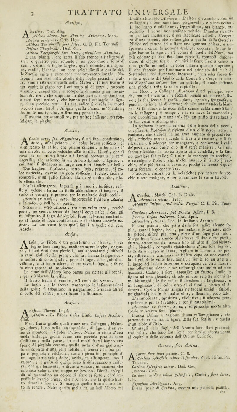 Abutilon . AButilon. Dod. Ang. lAltbcva altera, five ^Abutilon ^Avicenna. Matt. fAltbcea peregrina. Geli. Hort. ^iltbeca Theopbraflt fiore luteo. G. B. Pir. Tournef. Ibifcus Tbeophraiìi. Dod. Gal. Jlltb<ea Tbeopbrafli fiore luteo, quibujdam ^Abutilon. E'una ' pianta * che getta il Tuo tronco all’altezza di tre , o quattro piedi rotondo , un poco duro , folto di rami , veftito di foglie larghe, quali rotonde, ma aguz¬ ze, molli, bianche, un poco pelofe limili a quelle del¬ le Zucche unite a certe code mediocremente lunghe. Na- lcono i luoi fiori nelle afcelle delle foglie piccioli, gial¬ li, limili affatto a quelli della Malva . 11 fuo frutto è un capitello piano per l’ordinario al di fopra , rotondo a baffo , cannellato , e comporto di molti grani mem- branofi, neri, che s’aprono in due parti, e rinchiudono alcuni femi nericci , che hanno per l’ordinario la figu¬ ra d’un picciolo rene . La lua radice li divide in molti piccioli rami fottili . Alligna quella Pianta ne’Giardini ; ha in fe molto olio, e flemma; poco Tale. E’propria per ammollire, per unire ; infieme , per con- folidare le piaghe. Acacia. ACacia vera, feu AEgyptiaca, è uti fugo condenfato, auro , affai pelante , di color bruno rofficcio ; ci vien recato in palle, che pefano cinque , o fei oncie P una involte in certe vefciche affai fottili. Dicefi , che fi cava da un frutto Limile a i Lupini con reputo in certi baccelli, che nafcono in un Albero fpinofo d’Egitto, i cui rami fi ftendono in largo con fiori bianchi, e belli. Dee fceglierci l'acacia, netto, fodo, pefante, di co¬ lor nericcio, ovvero un poco rofficcio, lucido, facile a romperli, d’un gurto (litico. Ha in sè molto olio, e l'a¬ le effenziale. E’affai artringente. Ingraffa gli umori, fortifica, refi- fte al veleno ; ferma in fluffo abbondante di fangue , il corfo di ventre; è proprio per le malattie degli occhi. ^Acacia ex a'xdfiv, acuo, imperocché l’Albero ^Acacia è fpinofo, o vertito di punte. Siccome il vero ^Acacia , era una volta raro , perchè poco , ne veniva recato da luoghi dove nafce , così gli tu foftituito il lugo de’piccioli Pruni falvatici condenfa¬ to al fuoco in foda confidenza, e fi chiama Jlcacia no- ftras . Le fue virtù fono quafi limili a quelle del vero Acacia. A c a] a, ACaja, G. Pifon. è un gran Pruno dell’Indie, le cui foglie fono lunghe, mediocremente larghe, eaguz- , i fuoi fiori fono piccioli, ma abbondanti ; diipofti in rami gialljci ; Le prune, che fa, hanno la figura del¬ le nortre, di color giallo, piene di fugo, d’un guftofoa- viffimo, e di buon odore; fe ne cava il fugo, e fe ne fa vino capace ad itnbriacare. Le cime dell’Albero fono buone per nettar gli occhi, e per rifchiarare la vifta. Il frutto ferma il vomito, e’l corfo del ventre. Le foglie , e la (corza temperano le infiammazioni della gola; fi adoperano in gargarifmo; fermano altresì il corto del ventre, e fortificano lo filomaco. Acajou. ACajou. Theveti Lugd. wdcajou . G. Piton. Ca'jos Linfe. Cajous Acoftas . Ciuf. E’ un frutto groffo quafi come una Caftagna , bislun¬ go, duro, lifeio nella fua luperfizie , di figura d’un re¬ ne di montone, di color d’ulivo. Nafce in cima d’una mela bislunga groffa come una picciola pera di buon Criftiano ; nella parte , in cui molti frutti hanno una fpezie di picciola corona, quella mela è d’un giallo rof¬ ficcio coperto d’una pelle fottile , c tenera ; la fua pol¬ pa è fpugnofa e vifchiofa , tutta ripiena fui principio d* un fugo latticinofo; dolce, acido, ed artringente; ma il calore , e il gurto di quello fugo fi diftruggono a mifu- ra, che gli fermenta, e diventa vinofo, in maniera che imbriaca coloro, che troppo ne bevono. Dicefi, ch’egli dà al pannolino un colore di ferro sì forte , eh’è im¬ ponìbile levarlo prima, che l’Albero, che fa quello frut¬ to ritorni a fiorire . Si mangia quello frutto cotto iot- to la cenere . Nalce quella ^ìella d\ un bell’Albero del trafile chiamato ^Acajaiba . E’alto, e rotondo come un caftagno ; i fuoi rami fono pieghevoli , e s’incurvano . Il fuo legno è affai duro, ieggeriifimo, ora bianco, ora rofficcio. 1 vermi non poffono roderlo. E’molto ricerca¬ to per fare mafferizie, e per fabbricare vafcelli. E’coper¬ to d’una feorza, che raffomiglia a quella della Quercia • N’efce nel tempo della Hate una gomma chiara, e tra- lparente , come la gomma arabica, odorata ; le fue fo¬ glie hanno la figura, e’l colore di quelle del Noce, ma più odorate ; i fuoi fiori fono piccioli, comporti ciafche- duno di cinque foglie , e uniti infieme fino a cento in una groffa ombrella di color bianco quando s’aprono ; il che fuccede per l’ordinario nel principio del mefe di Settembre; poi diventano incarnati, d’un odor foave fil¬ mile a quello del Giglio delle Convalli ; s’erge in mez¬ zo d’ogn’uno de’fuoi fiori un piftillo, il quale foftenta una picciola terta fatta in capitello. La Noce , o Cafiagna d'Alcajou è nel principio ver¬ de, ma nel maturarfi, e leccarli prende un colore d’Uli¬ vo ; la fua feorza è groffa , dura, legnofa, fpugnofa, o porola, nericcia al di dentro; chiude una mandorla bian¬ ca. Si fa cuocere la noce nella cenere calda come fi fan¬ no le caftagne ; fi rompe , e fe ne cava la mandorla , eh’è buoniffima a mangiarfi. Ha un gurto d’avellana j la fua virtù e artringente. La foftanza fpugnofa interna della feorza della noce , o cafiagna à'Jlcajou. é ripiena d’un olio nero, acro, e cauftico, che traluda da un gran numero dì piccioli bu¬ chi , principalmente quando il frutto è recente , e fi fa riscaldare ; fi adopera per mangiare, e confumare i calli de’piedi ; cavarti quell’ olio in diverfe maniere . Gli uni fanno rifcaldare la feorza aperta alla candella, e la fan¬ no gocciare fui callo; Gli altri la mettono in torchio , e raccolgono l’olio , che n’efce quando il frutto è vec¬ chio, v’è più fatica a cavarlo; perchè la feorza è quafi tutta feccata, o condenfata. S’adopera ancora per le volatiche; per nettare le vec¬ chie ulcere maligne, e per confumare le carni bavofe. A.canthu r. ACantbus. Matth. Cod. in Diofc. jlcantbus verus. Trajr. Acantus fativus , vel mollis Vergila C. B. Pit. Tour¬ nef. Caràlias Jicantbus, Jìve Branca Vrflna . I. B. Branca Vrfina Itaìorum. Giul. Epift, jicantbus fativus. Dod. In Italiano Acanto. E’ una pianta , che getta dalla fua radice alcune fo¬ glie, grandi larghe, belle, profondamente tagliate, mol¬ li, pelofe, diftefe per terra , piene d’un fugo glutinofo . S’erge fra effe un tronco all’altezza di due o tre piedi , dritto, attorniato dal mezzo fino all’alto di fiori bislun¬ ghi , bianchi , comporti cialcheduno d’una fola foglia , fatta da un capo in lama, tagliata in labbro a tre pez¬ zi, riflretta, e terminata dall’altro capo da una cannel¬ la il più delle volte breviffima, e fimile ad un anello . 11 luogo del labbro fuperiore è occupato da certi (lami , che foftentano alcune cime raffomiglianti molto ad una fpazzola. Caduto il fiore, apparifee un frutto, fimile in figura ad una ghianda ; chiude in due cellette alcuni fe¬ mi bislunghi ; le fue radici fi ftendono in larghezza, e in lunghezza , di color nero al di fuori , bianco al di dentro . Quella Pianta alligna ne’luoghi umidi , faffofi, ne’giardini; ha in fe molto olio, e flemma, poco late. E’ammortente , aperitiva , rilolutiva; fi adopera prin¬ cipalmente per le lavande, e per li cataplasmi. ^Icantbus ex ixxvQ* , Spina ; imperocché molte altre fpezie d’ Acanto fono fpinofe . Branca Urfina a cagione d’una raffomiglianza , che pretenderti vi dia fra la figura della fua foglia , e quella d’un piede d’Orfo. Cintagli delle foglie dell’Acanto fono flati giudicati così belli , che fono flati fcelti per fervire d’ornamento, al capitello delle colonne dell’Ordine Corintio. Ac ama , five Acorna , ACarna fiore luteo patulo. C. B. Carlina Syfoeflris minor Uifpanica. Ciuf. Hirtor. Pit. Tournef. Carlina Sylvejìris minor. Dod. Ger. jlcorna. Caef. Carduus carlina minor Sylvejìris , Clufiii , flore luteo, I. B. Erynoium ^irchigenu. Ang. E’ una Ipezie di Carlina, ovvero una picciola pianta , che