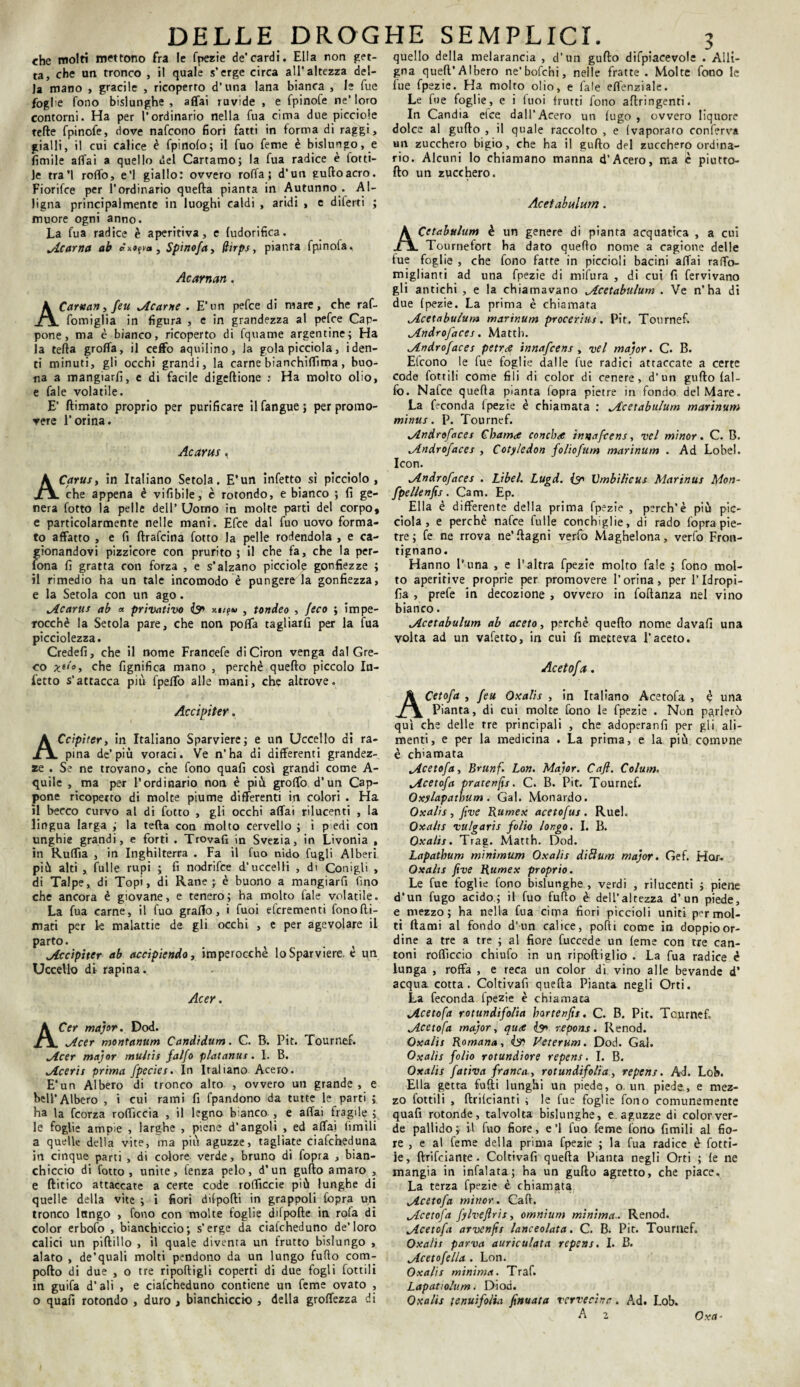 DELLE DROG che molti mettono fra le fpezie de’cardi. Ella non get¬ ta, che un tronco , il quale s’erge circa all'altezza del¬ la mano , gracile , ricoperto d* una lana bianca , le fue foghe fono bislunghe , affai ruvide , e fpinofe ne’ loro contorni. Ha per l’ordinario nella fua cima due picciole tede fpinofe, dove nafcono fiori fatti in forma di raggi, gialli, il cui calice è fpinolo; il fuo feme è bislungo, e fienile affai a quello del Cartamo; la fua radice è fotti- le tra’l roffo, e’1 giallo: ovvero roffa ; d'un gufilo acro. Fiorifce per l’ordinario quella pianta in Autunno . Al¬ ligna principalmente in luoghi caldi , aridi , e dilerti ; muore ogni anno. La fua radice è aperitiva, e ludorifica. Scarna ab «x^o, Spinofa, ffirps, pianra fpinofa, Acarnan . A Cantari, feu Acarne . E’un pefee di mare, che raf- fomiglia in figura , e in grandezza al pefee Cap¬ pone , ma è bianco, ricoperto di fquame argentine; Ha la fella groffa, il ceffo aquilino, la gola picciola, iden¬ ti minuti, gli occhi grandi, la carne bianchiffima, buo¬ na a mangiarli, e di facile digeflione : Ha molto olio, e fale volatile. E’ (limato proprio per purificare ilfangue; per promo¬ vere l’orina. Acarus , ACarus, in Italiano Setola. E’un infetto si picciolo, che appena è vifibile, è rotondo, e bianco ; lì ge¬ nera fotto la pelle dell’ Uomo in molte parti del corpo, e particolarmente nelle mani. Efce dal fuo uovo forma¬ to affatto , e fi ftrafeina fotto la pelle rodendola , e ca¬ gionandovi pizzicore con prurito; il che fa, che la per- fona fi gratta con forza , e s’alzano picciolp gonfiezze ; il rimedio ha un tale incomodo è pungere la gonfiezza, e la Setola con un ago. Acarus ab « privativo & , tondeo , feco ; impe¬ rocché la Setola pare, che non poffa tagliarli per la fua picciolezza. Credei!, che il nome Francefe diCiron venga dal Gre¬ co xiio> che lignifica mano , perchè quello piccolo In¬ fetto s’attacca più fpeffò alle mani, che altrove. Ac ci pi ter. ACcipitcr, in Italiano Sparviere; e un Uccello di ra¬ pina de’più voraci. Ve n’ha di differenti grandez¬ ze . Se ne trovano, che fono quali cosi grandi come A- quile , ma per l’ordinario non è più groffo d’un Cap¬ pone ricoperto di molte piume differenti in colori . Ha il becco curvo al di fotto , gli occhi affai rilucenti , la lingua larga ; la teda con molto cervello ; i p edì con unghie grandi, e forti . Trovali in Svezia, in Livonia , in Ruffia , in Inghilterra . Fa il fuo nido fugli Alberi più alti , fulle rupi ; fi nodrifee d'uccelli , di Conigli , di Talpe, di Topi, di Rane; è buono a mangiarli fino che ancora è giovane, e tenero; ha molto fale volatile. La fua carne, il fuo graffo, i fuoi eferementi fono fil¬ mati per le malattie de gli occhi , e per agevolare il parto. ^ ( Accipiter ab accipiendo, imperocché lo Sparviere, e un Uccello di rapina. Acer. ACer major. Dod. .Acer montarmm Candidum. C. B. Pit. Tournef. Acer major multis fa/fo platanus. 1. B. licerti prima fpecies. In Italiano Acero. E’un Albero di tronco alto , ovvero un grande , e bell’Albero , i cui rami fi fpandono da tutte le parti ; ha la feorza rofiìccia , il legno bianco , e affai fragile ; le foglie ampie , larghe , piene d’angoli , ed affai limili a quelle della vite, ma più aguzze, tagliate ciafcheduna in cinque parti , di colore verde, bruno di fopra , bian¬ chiccio di fotto, unite, fenza pelo, d’un gufilo amaro , e ftitico attaccate a certe code rofficcie più lunghe di quelle della vite ; i fiori ditpolli in grappoli Copra un tronco lungo , fono con molte foglie dùpolle in rofa di color erbofo , bianchiccio; s’erge da ciafeheduno de’loro calici un piftillo , il quale diventa un frutto bislungo , alato , de’quali molti pendono da un lungo furto com¬ pollo di due , o tre riportigli coperti di due fogli fottìii in guifa d’ali , e ciafeheduno contiene un feme ovato , o quali rotondo , duro , bianchiccio , della groffezza di HE SEMPLICI. 3 quello della melarancia , d’un gullo difpiacevok . Alli¬ gna quefl’Albero ne'bofchi, nelle fratte. Molte fono le lue fpezie. Ha molto olio, e fale effenziale. Le file foglie, e i fuoi frutti fono allringenti. In Candia elee dall’Acero un fugo , ovvero liquore dolce al guflo , il quale raccolto , e (vaporato conferva un zucchero bigio, che ha il gullo del zucchero ordina¬ rio. Alcuni lo chiamano manna d'Acero, ma è piutto- fto un zucchero. Acetabulum. ACetabulum è un genere di pianta acquatica , a cui Tournefort ha dato quello nome a cagione delle fue foglie , che fono fatte in piccioli bacini affai raffo- miglianti ad una fpezie di mifura , di cui fi fervivano gli antichi , e la chiamavano Acetabulum . Ve n’ha di due Ipezie. La prima è chiamata Acetabulum marinum procerius. Pit. Tournef. Androfaces. Matti). Androfaces petr<s innafeens , vel major. C. B. Elcono le fue foglie dalle fue radici attaccate a certe code fiottili come fili di color di cenere, d’un gufilo lai - fo. Nafce quella pianta (opra pietre in fondo del Mare. La feconda Ipezie è chiamata : Acetabulum marinum mima. P. Tournef. Androfaces Chamce conchce innafeens, vel minor. C. B. Androfaces , Cotyledon foliofum marinum . Ad Lobel. Icon. Androfaces . Libel. Lugd. {30 Vmbilicus Marinus Mon- fpellenfis. Cam. Ep. Ella è differente della prima fpezie , perch’è più pic¬ ciola , e perchè nafce fulle conchiglie, di rado fopra pie¬ tre ; fe ne rrova ne’llagni verfo Maghelona, verfo Fron- tignano. Hanno P una , e l'altra fpezie molto fale ; fono mol¬ to aperitive proprie per promovere l’orina, per l’Idropi- lia , prefe in decozione , ovvero in follanza nel vino bianco. Acetabulum ab aceto, perchè quello nome davafi una volta ad un vafetto, in cui fi metteva l’aceto. Acetofa. ACetofa , feu Oxalis , in Italiano Acetofa , è una Pianta, di cui molte fono le fpezie . Non parlerò qui che delle tre principali , che adoperanfi per gli ali¬ menti, e per la medicina . La prima, e la più comune è ch'amata Acetofa, Brunf. Lon. Major. Cafi. Colum. Acetofa pratenfu. C. B. Pit. Tournef. Oxylapathum. Gal. Monardo. Oxalis , five Rumex acetofus . Ruel. Oxalis vulgaris folio longo. I. B. Oxalis. Trae. Matth. Dod. Lapatbum minimum Oxalis diBum major. Gef. Hoc. Oxalis five Rumex proprio. Le fue foglie fono bislunghe, verdi , rilucenti ; piene d’un fugo acido.; il fuo furto è dell’altezza d’un piede, e mezzo; ha nella fua cima fiori piccioli uniti per mol¬ ti Itami al fondo d'un calice, polli come in doppio or¬ dine a tre a tre ; al fiore Cuccede un leme con tre can¬ toni rolficcio chiufo in un ripoftiglio . La fua radice è lunga , roffa , e reca un color dì vino alle bevande d’ acqua cotta. Coltivarti quella Pianta negli Orti. La feconda fpezie è chiamata Acetofa rotundifolia hartenfis. C. B. Pit. Tcurnef. Acetofa major, qiae & repons. Renod. Oxalis Romana, iy> Veterum. Dod. Gal. Oxalis folio rotundiore repens. I. B. Oxalis fativa franca, rotundifolia, repens. Ad. Lob. Ella getta folli lunghi un piede, o. un piede, e mez¬ zo Cottili , flrilcianti ; le fue foglie fono comunemente quali rotonde, talvolta bislunghe, e. aguzze di color ver¬ de pallido ; il fuo fiore, e ’l fuo feme fono fimili al fio¬ re , e al feme della prima fpezie ; la fua radice è fiotti¬ le, llrifciante. Coltivali quella Pianta negli Orti ; le ne mangia in infialata; ha un gufilo agretto, che piace. La terza fpezie è chiamata Acetofa minor. Cali. Acetofa fylveflris, omnium minima . Renod. Acetofa arvenfis lanceolata. C. B. Pit. Tournef. Oxalis parva auriculata repens. I. B. Acetofella . Lon. Oxalis minima. Traf. Lapatiolum. Diod. Oxalis tenuifolia finuata rcrvecinr. Ad. Lob. Ora-