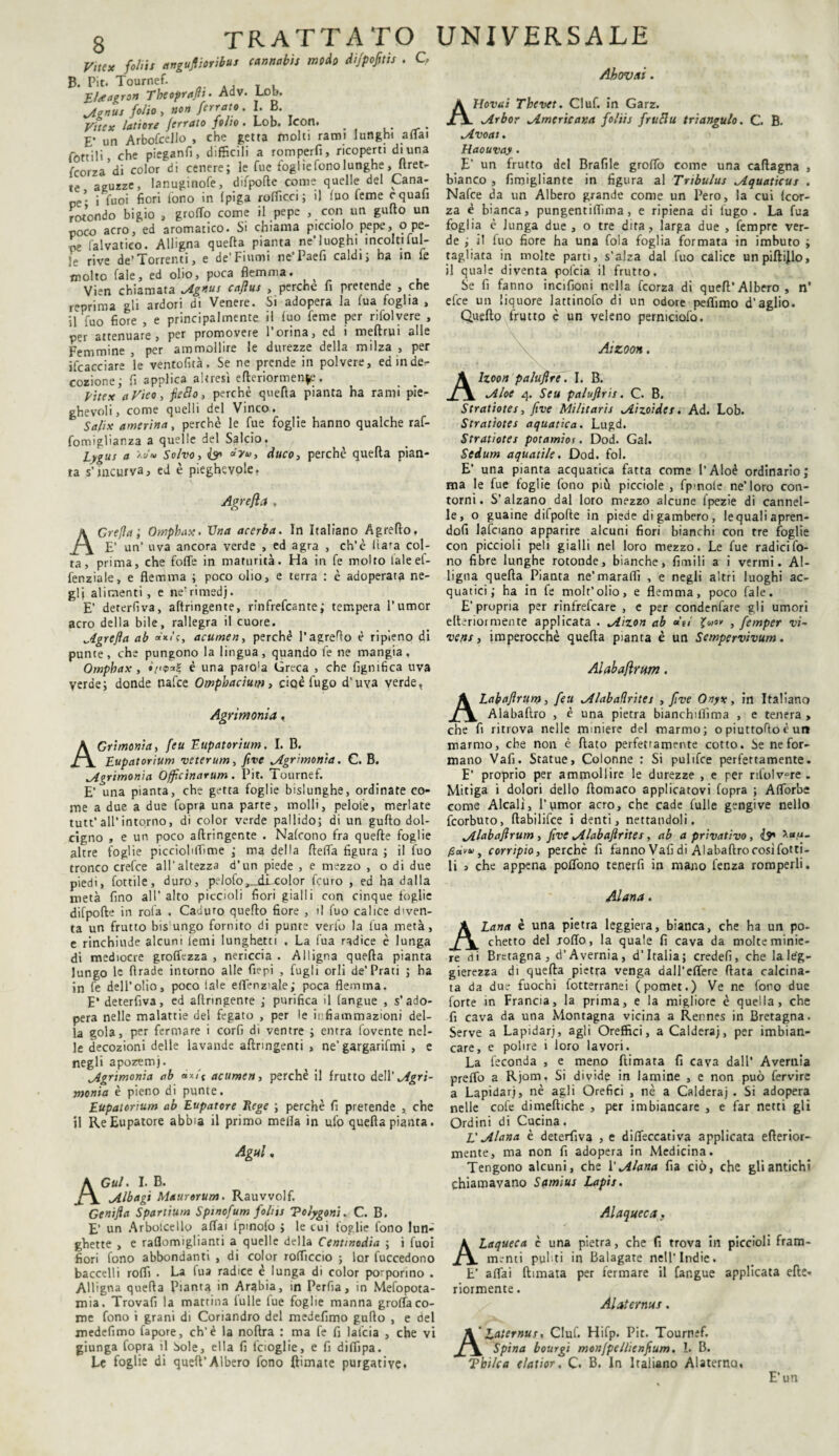 Vite* foltit anguftioribuj cannabis modo dijpofitis . C B. Pit. Tournef. .... T . EUagron Theoprajh• Adv. Lob. lAgnus folio , non ferrato. I. B. Vttex latiore ferrato folto. Lob. Icon. . . E’ un ArbofceJlo , che getta molti rami lunghi aliai lottili, che pieganfi, difficili a romperli, ricoperti diuna fcorza’di color di cenere; le fue fogl ìe fono lunghe , ftret- te aguzze, lanuginofe, difpofte come quelle del Cana¬ pe’ i Tuoi fiori fono in (piga roflìcci; il luo Teme c quali rotondo bigio , grolTo come il pepe , con un gufto un poco acro, ed aromatico. Si chiama picciolo pepe, o pe¬ pe falvatico. Alligna quella pianta ne’luoghi incoltiful- je rivs de’Torrenti, e de’Fiumi ne'Paelì caldi; ha in le molto fale, ed olio, poca flemma. Vien chiamata Mgnus caftus , perche li pretende , che reprima gli ardori di Venere. Si adopera la fua foglia , il fuo fiore , e principalmente il luo feme per rifolvere , per attenuare, per promovere l’orina, ed i meltrui alle Femmine , per ammollire le durezze della milza , per Scacciare le ventofità. Se ne prende in polvere, ed in der¬ ilione; fi applica altresì efteriormenfe. Vitere aVieo, fteElo, perchè quella pianta ha rami pie¬ ghevoli, come quelli del Vinco. Salix amerina, perchè le fue foglie hanno qualche raf- fomiglianza a quelle del Salcio. Lygus a Solvo, I30 àyu, duco, perchè quella pian¬ ta s’incurva, ed è pieghevole. Agrefla , AGrefla; Omphax. Una acerba. In Italiano Agretto, E’ un’ uva ancora verde , ed agra , ch’è fiata col¬ ta, prima, che fotte in maturità. Ha in fe moiro taleef- fenziale, e flemma ; poco olio, e terra : è adoperata ne¬ gli alimenti, e ne’rimed). E’ dererfiva, attingente, rinfrescante; tempera l’umor acro della bile, rallegra il cuore. Agrefla ab «*/’?, acumen, perché l’agretto è ripieno di punte, che pungono la lingua, quando fe ne mangia, Omphax, è una paro'a Greca , che lignifica uva verde; donde nafee Omphacium, cioè fugo d’uva verde, Ahoveti. AHoviti Thcvet. Ciuf, in Garz. jìrbor Americana foliis frufiu triangulo. C. B. Jlvoai. Haouvay . E’ un frutto del Brafile grotto come una cattagna , bianco , fimigliante in figura al Tnbulus ^iquaticus . Nafee da un Albero grande come un Pero, la cui Icor- za è bianca, pungentissima, e ripiena di fugo . La fua foglia è lunga due , o tre dira, larga due , fempre ver¬ de ; il fuo fiore ha una fola foglia formata in imbuto ; tagliata in molte parti, s’alza dal fuo calice unpiftijlo, il quale diventa polcia il frutto. Se fi fanno incifioni nella feorza di quett’Albero , n’ efee un liquore lattinofo di un odore peflìmo d’aglio. Quello frutto c un veleno permeiofo. Aizoon. Alzoon paluflre'. I. B. jiloe 4. Seu palujlris. C. B. Stratiotes, five Militarle MLìzoides. Ad. Lob. Stratiotes aquatica. Lugd. Stratiotes potamios. Dod. Gal. Sedum aquatile. Dod. fol. E’ una pianta acquatica fatta come l’Aloè ordinario; ma le fue foglie fono più pìcciole , fpmole ne’loro con¬ torni. S’alzano dal loro mezzo alcune lpezie di cannel¬ le, o guaine difpofte in piede di gambero, I e quali apren¬ doli lafciano apparire alcuni fiori bianchi con tre foglie con piccioli peli gialli nel loro mezzo. Le fue radici fo¬ no fibre lunghe rotonde, bianche, limili a i vermi. Al¬ ligna quella Pianta ne’marattì , e negli altri luoghi ac¬ quatici; ha in fe molt’olio, e flemma, poco fale. E’propria per rinfrefeare , e per condenfare gli umori elteriormente applicata . M.izon ab »tl £«»•' , femper vi- vene, imperocché quella pianta è un Sempervivum. Alabaflmm. Agrimonia, Grìmonia, feu Eupatorium. I. B. Eupatorium veterum, five Agrimonia. C. B. ^Agrimonia Officìnarum. Pit. Tournef. E’ una pianta, che getta foglie bislunghe, ordinate co¬ me a due a due fopta una parte, molli, pelofe, merlate tutt’ all’intorno, di color verde pallido; di un gufto dol- cigno , e un poco attingente . Nalcono fra quelle foglie altre foglie picciohflìme ; ma della fletta figura ; il fuo tronco crefee all’altezza d’un piede , e mezzo , o di due piedi, Lottile, duro, pelofo,_dLcolor feuro , ed ha dalla metà fino all’alto piccioli fiori gialli con cinque foglie difpofte in rofa . Caduto quello fiore , il fuo calice diven¬ ta un frutto bis ungo fornito di punte verfo la lua metà, e rinchiude alcuni lenii lunghetti . La fua radice è lunga di mediocre grettezza , nericcia . Alligna quella pianta lungo le ttrade intorno alle fiepi , fugli orli de’Prati ; ha in fe dell'olio, poco lai e ettenz'ale; poca flemma. E* deterfiva, ed attringente ; purifica il [angue , s’ado¬ pera nelle malattie del fegato , per le infiammazioni del¬ la gola, per fermare i corfi di ventre ; entra fovente nel¬ le decozioni delle lavande aftringenti , ne’gargarifmi , e negli apozemj. vAgrimonia ab »*/{ acume», perchè il frutto dell' Agri¬ monia è pieno di punte. Eupatorium ab Eupatore Rege ; perchè fi pretende , che il Re Eupatore abbia il primo metta in ufo quella pianta. Agni. AGul. I. B. Albagi Maurerum. Rauvvolf. Genifia Spartium Sptnofum folns Volygoni. C. B. E1 un Arbolcello attai ipinofo ; le cui foglie fono lun¬ ghette , e raflomiglianti a quelle della Centinodia ; i fuoi fiori fono abbondanti , di color rotticelo ; lor fuccedono baccelli rotti . La fua radice è lunga di color porporino . Alligna quella Pianta in Arabia, in Perfia, in Mefopota- mia. Trovali la mattina luIle fue foglie manna grotta co¬ me fono i grani di Coriandro del medefimo gufto , e del medefimo fapore, ch’è la noftra : ma fe fi lalcia , che vi giunga Copra il Sole, ella fi Scioglie, e fi diflipa. Le foghe di quell’Albero fono (limate purgative. ALabafirum, feu ^llaballrites , five Onyx, in Italiano Alabafìro , è una pietra bianchiilima , e tenera , che fi ritrova nelle miniere del marmo; o piuttofto è un marmo, che non è flato perfettamente cotto. Se ne for¬ mano Vafi. Statue, Colonne : Si pulifce perfettamente. E’ proprio per ammollire le durezze , e per rilo1vere . Mitiga i dolori dello ftomaco applicatovi Copra ; Attorbe come Alcali, l’umor acro, che cade Culle gengive nello Scorbuto, ftabilifce i denti, nettandoli. Alabaftrum , five Alabafirites, ab a privativo, & >.«/*- /Sai'»’, corripto, perchè fi fanno Vafi di Alabafìro cosi Cotti¬ li > che appena pottono tenerfi in mano fenza romperli. Alana . A Lana è una pietra leggiera, bianca, che ha un po- chetto del retto, la quale fi cava da molte minie¬ re di Bretagna, d’Avernia, d’Italia; credefi, che la leg¬ gerezza di quella pietra venga dall’effere fiata calcina¬ ta da due fuochi fotterranei (pomet.) Ve ne fono due forte in Francia, la prima, e la migliore è quella, che fi cava da una Montagna vicina a Rennes in Bretagna. Serve a Lapidarj, agli Oreffici, a Caldera;, per imbian¬ care, e polire i loro lavori. La feconda , e meno ftimata fi cava dall’ Avertila pretto a Rjom, Si divide in lamine , e non può fervire a Lapidar), nè agli Orefici , nè a Caldera). Si adopera nelle cote dialettiche , per imbiancare , e far netti gli Ordini di Cucina. L'Alana è deterfiva , e ditteccativa applicata efterior- mente, ma non fi adopera in Medicina. Tengono alcuni, che l’A lana fia ciò, che gli antichi chiamavano Samius Lapis. Alaqueca. ALaqueca c una pietra, che fi trova in piccioli fram¬ menti puliti in Balagare nell’Indie. E’ attai filmata per fermare il fangue applicata elle- riormente. Alaternus. ALuternus, Ciuf. Hifp. Pit. Tournef. Spina bourgi mon/pelJienfium. I. B. Tbilca elatior. C. B. In Italiano Alaterno.