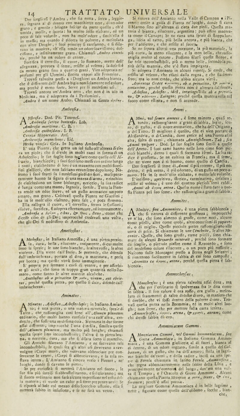 Dee t'ceglicrfi l'Ambra , che fia netta , fecca , leggie¬ ra , fegnata al d: dentro con macchiette nere, dinnodor grato , e gentile : bifogna lafciar da parte quella , eh'è umida’, molle, e fporca : ha molto Tolfo efalrato, ed un poco di (ale volatile , non ha molt’odore , finch’ella è in malfa ; ma quando è ridotta in polvere, e mefcolata con altre Droghe, i luoi principj fi rarefanno, e fi dila¬ tano in maniera, ch’ella rende un odorefoaviftimo; dol- cilftmo, e infinitamente grato. Chiamali cimbra cineri¬ zi,, perchè ha un colore di cenere. Fortifica il cervello, il cuore. Io flomaco, mette dell’ allegrezza, provoca il leme, refifte al veleno ; la dofe fi è eia mezzo grano fino a quattro grani. Vien adoperata ne’ profumi per gli Uomini. Eccita vapori alle Femmine. Trovali talvolta pretto a i Droghieri un Ambra bianca , che è differente dall’ Ambra bigia non fidamente nel colore, ma perchè è meno forte. Serve per li medefimi ufi. Trovafi ancora un’Ambra nera , che non è in ufo in Medicina, ma è adoperata da i Profumieri. jlmbra è un nome Arabo. Chiamafi in Greco . Ambrofia. AJllbrcfia. Dod. Pit. Tournef. ^Ambrofia fiat iva bortenfis. Lob. ^imbrojìa maritima. C. B. „Ambrofia quibvjdam. I. B. Conyza Hippocratis. Anf. jtrthemifia monoclonos. Eid. Herba vinofat Gefa. In Italiano Ambrofia. E’ una Pianta, che getta un fol furto all’altezza di cir° ca un piede; che fi divide in molti rami in forma di un Arbofcello; le fue foglie lono tagliatecomequelIedeU’Af- feuzio, bianchiccie; i fuoi fiori fono meffi con ordine lungo i rami; ciafcheduno di loro è un mazzetto con molti fiorel¬ lini giallicci, che non lafciano verun feme dopo loro ; Na- feono i fuoi frutti fu i medefimi piedi dei fiori, mafepara- tamente hanno la figura di una mazza di arma , e rinchiu¬ de ciafcheduno un feme bislungo, nericcio, la lua radice è lunga come una mano, legnofa, fiottile. Tutta la Pian¬ ta rende un odor foave, ed un gufto aromatico un poco amaro, ma grato. Coltivarti quella Pianta ne’Giardini ; ha in fe molt’olio efaltato, poco fiale , e poca flemma. Ella rallegra il cuore, e’1 cervello, ferma lefluffioni; rifolve, fortifica, fi adopera erternamente,ed internamente . wAmbrofia a fifina , cibus, Qeoi , Deus , come che diceffe cibo de gli Dei; imperocché credevafi una volta, che gli Dei fi nodriffero di Ambrofia. Amethyfìus. AMethyJìus , in Italiano Ametifta ; è una pietra prezio- ia , dura, bella, rilucente, trafparente, di cui molte fono le fpezie ; le une fono bianche, le altre roffe, lealtre violette. Ella viene dall’Indie. Si pretende, che difenda dall’imbriachézza, portata al dito, o macinata, e prela per bocca; ma quefte virtù fono immaginarie. E’ propria per fermare 1 corfi di ventre, e per attorbi- re gl. acidi, che fono in troppo gran quantità nellorto- maco, come fanno le altre materie alcahche. „Ametbyfius ab a privativo & > vinum, aut ebrie- tas, perchè quella pietra, per quello fi dice, difende dall’ imbriachezza . Aminatus. AMìnatus , Asbefion ,Asbeftes lapis ; in Italiano Amian¬ to; è una petra, o una materia minerale, fpeziedi Talco , che ralfomiglia così bene z\\' Alumen plumeum ordinario, che molti hanno confala l’una coll’altra, cre¬ dendo, che fotte una medefima cofia . Si ritruva in due forme affai diff-renti; imp rocche I’una è in fila, fimilea quelle àe.\\' Alumen plumeum, ma molto più lunghe; chiamarti quella fpezie 1 no incombuftioile ; l’altra è in pietra bru¬ na, o nericcia, dura, ma che fi dilata fiotto il martello. Gli Antichi filavano l’Amianto , e ne facevano tele incomburtibili, le quali fra gli altri ufi fervivano a rav¬ volgere i Corpi morti, che volevano abbruciare per con- fervarne le ceneri, i Corpi fi abbruciavano, e la tela re¬ flava intera . L’Amianto fi ritrova verto i Pirenei , ne’ luoghi, donde fi cavano le pietre. Se per curiofità fi metterà l’Amianto nel fuoco , le fue fila più fiottili fi abbruflcliranno, e fi distaranno ; ma il fuoco ordinario non farà alcuna impretfione nel redo del¬ la materia; ci vuole un calor più forte per penetrarvi : Se fi efporrà al Sole col mezzo delloSpeccho urtorio, ella fi metterà fubito in infufione, e fe ne farà un vetro. Si ritrova dell’Amianto nella Valle di Campati a i Pi¬ renei : crefee a guifa di Pianta ne’luoghi, donde fi cava il Marmo fino all’altezza di circa due piedi. Quella ma¬ teria è bianca, rilucente, argentina: può effere macera¬ ta come il Canape; Se ne cava una fpezie di floppa lun¬ ga, lifeia al tatto, più bella ancora, e più bianca, che per l’addietro, e che refirte al fuoco* Se ne fepara altresì una porzione, la più materiale, la più corta, la meno rilucente, e la men bella, che ralfo- rniglia molto al cotone. PoflTono filarli quefte ftoppe, e far tele incomburtibili, più o meno belle, fecondo la pu¬ rità della materia, che v’è fiata impiegata. Si adopera l’Amianto in alcuni rimedj. Si crede, che refifta al veleno, che rifani dalla rogna, e che fiadeter- fivo; ma io non credo, che abbia alcuna virtù. Amiantus Greece «/t/av-roj, ab a privativo, & fin'1'», contamino, perchè quella pietra non è alterata dal fuoco. Aibefion, Asbefies , ide/ì, ìnextinguTbilis ab a privati? vo, is* rfiìvvuui. Exinguo: perchè quella materia reila ne} fuoco come eftinta, e non fi accende. Animi. AMmi, vel fiemen amneos , è feme minuto , quarti ro¬ tondo, raffomigliante a'grani di labbia, bigio, feu- ro,'di guito, e di OJorearomatico , che ha dell’Origano? o del Timo. Il migliore è quello, che ci vien portate di Aleffandria, o diCandia, dove orefice ad una Pianta affai alta, folta di rami , chiamata Amniofiefinum. Tab ; [tu jLmmi vulgare . Dod. Le fue foglie fono limili a quelle dell’Aneto. I fuoi rami hanno nelle loro cime fiori pic¬ cioli bianchi, dietro i quali fi formano ifemi. La rtua ra¬ dice è grofletta. Se ne coltiva in Francia; ma il feme, che ne viene non è sì buono, come quello di Candia. Dee fceglierfi il feme di jLmmì il più recente, il più no¬ dritto, il più netto, il più odorato, di un gufto un poco a- maro. Ha in fe molt’olio efaltato, e moltofalevolatile. E’incìfivo, aperitivo, itterico, carminativo, cefalico ; relifte al veleno ; è uno dei quattro piccioli'lemi caldi . jlmmi ab ànn°t arena. Quefio nomee flato dato a que¬ lla Pianta pel fuo feme, che rattomigliaagranidifabbia. Ammites. AMmites, five Ammonites, è una pietra fabbionofa , che fi ritrova di differente groffezza ; imperocché ve n’ha, che fono almeno sì groffe, come noci, alcune come pifelli, altre come orobi, al tre come femi di papave¬ ri, o di miglio. Quefte picciole pietre raffomiglianoalle uova dì pefee. Si chiamano le uneCencbrite, lealtreMf- conite. Quelle, che fono grotte, come pifelli, fono chia¬ mate da alcuni Bezoardo minerale , perchè fono formate da fcaglie, o picciole piaftre come il Rezoardo , e fono del medefimo colore rilucente , o un poco più rotticcie . Mattono fui le Montagne pretto a Berna negli Svizzeri ; fi rimettono facilmente in labbia di cui fono comporto . Ammites ex annoi, arena, perchè quella pietra è fab- bionota. Ammocbryfus. \ Mmccbryjus ; è una pietra talvolta affai dura , ma che Per l’ordinario fi fpolvenzza fra le dita come in labbia . 11 fuo colore è ora rotto, ora giallo , melco- lato di frammenti di talco di color di oro, in maniera che fi direbbe, che vi fotte dentro della polvere di oro. Tro¬ vafi quella piètra netta Boemmia, ed in molti altri luo¬ ghi; non ferve, che per mettere fulla carta fcritta. Ammocbryfus, annue, arena, aurum; come chi dicette labbia dir oro. Ammoniacum Gammi . AMmcniacum Gummi, vel Gùmmi hammoniacum, five Gutta Ammoniaca , in Italiano Gomma Ammo¬ niaca , è una Gomma gialliccia, al di fuori , bianca al di dentro, di un odore ingrato, limile a quello del Gal- banum, di un gurto, che ha dell’amaro; ftilla in lagri¬ me bianche da’rami , e della radice , incili da una lpe- zie di Ferula chiamata in latino Ferula Ammonifera , che regna abbondantemente nelle fabbie della Libia , e principalmente ne’contorr* del luogo, dov'era una vol¬ ta il Tempio , e l’Oracolo di Giove Aminone . Alcuni chiamano quella Pianta Metopion a n*7*, trans, iS' iti, foramen ; perch’è attui poroia . La migliore Gomma Ammoniaca è in belle lagrime , nette , figurate come quelle dell’olibano , iecche , bian¬ che.