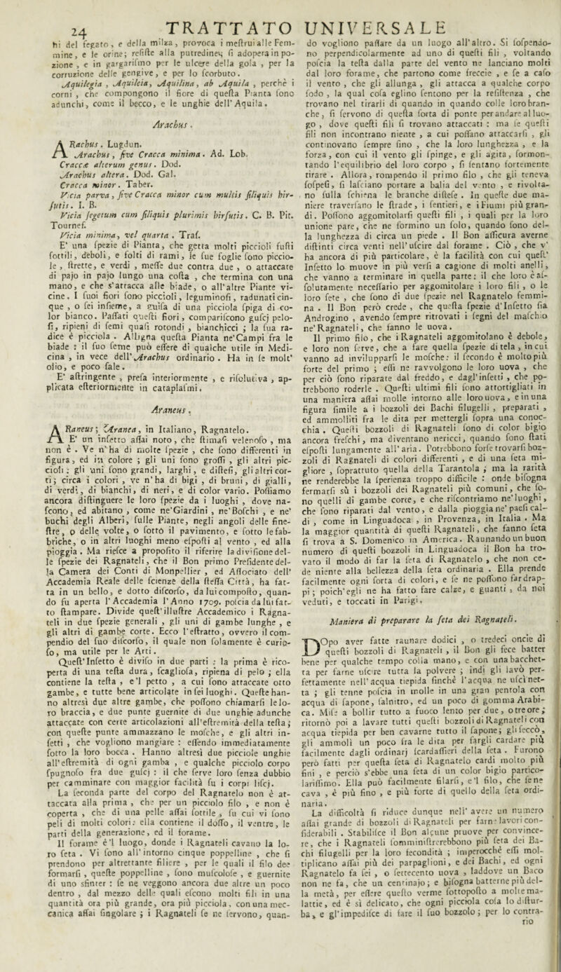 hi del fegato, e della milza, provoca i meftrui alle Fem¬ mine, e le orine; refifie alla putredine*; fi adopera in po¬ zione , e in gargarifmo per le ulcere della gola , per la corruzione delle gengive, e per lo fcorbuto. „Aquilegia , ^Iquìleia, ^Aquilina, ab jlquila , perchè i corni , che compongono il fiore di quella Pianta fono adunchi, come il becco, e le unghie dell’Aquila. Arachus. ARachus. Lugdun. Vtracbus, five Cracca minima. Ad. Lob. Cracc<e a/terum genus. Dod. ^Arachus altera. Dod. Gal. Cracca minor. Taber. Vcia parva , five Cracca minor cum multis fili quii hir- Jutis. I. B. Vici a Jegetum cum filiquis plurimis bìrfutis. C. B. Pir. Tournef. Vieta minima, vel quarta. Traf. E’ una fpezie di Pianta, che getta molti piccioli fufti fottili, deboli, e folti di rami, le lue foglie fono piccio- le , llrette, e verdi , rneflfe due contra due , o attaccate di pajo in pajo lungo una coffa , che termina con una mano, e che s’arracca alle biade, o all*altre Piante vi¬ cine. I Tuoi fiori fono piccioli, leguminofì, radunati cin¬ que , o fei infieme, a cuila di una picciola fpiga di co¬ lor bianco. Ballati quelli fiori, comparilcono gufej pelo- fi, ripieni di femi quafi rotondi , bianchicci ; la fua ra¬ dice è picciola . Alligna quella Pianta ne’Campi fra le biade : il fuo feme può ellere di qualche utile in Medi¬ cina , in vece dell' vlracbus ordinario. Ha in le molt’ olio, e poco fiale. E’ afiringente , prefa interiormente , e rifolutiva , ap¬ plicata citeriormente in cataplafmi. Araneus, Ranetti ÌAranea, in Italiano, Ragnatelo. E’ un infetto aliai noto, che Rimali velenofo , ma non è . Ve n'ha di molte fpezie , che fono differenti in figura, ed in colore ; gli uni fono groffi , gli altri pic¬ cioli; gli uni fono grandi, larghi, e difiefi, gli a 1 tri cor¬ ri j circa i colori , ve n’ha di bigi , di bruni, di gialli, di verdi, di bianchi, di neri, e di color vario. Polliamo ancora difiinguere le loro fpezie da i luoghi , dove na- feono, ed abitano , come ne’Giardini , ne’Bolchi , e ne’ buchi degli Alberi, fulle Piante, negli angoli delle fine- lire, o delle volte, o lotto il pavimento, e lotto le fab¬ briche, o in altri luoghi meno efpolti al vento , ed alla pioggia. Ma riefee a propolito il riferire la divifione del¬ le fpezie dei Ragnateli, che il Bon primo Prefidente del¬ la Camera dei Conti di Monpellier , ed Allociato dell* Accademia Reale delle faenze della fieffa Città, ha fat¬ ta in un bello, e dotto difcorfo, da luicompoRo, quan¬ do fu aperta l’Accademia l’Anno 1709. polcia da ltu fat¬ to Rampare. Divide queR’illuRre Accademico i Ragna- teli in due fpezie generali , gli uni di gambe lunghe , e gli altri di gambe corte. Ecco l'eRratto, ovvero il com¬ pendio del fuo difcorfo, il quale non fidamente è curia¬ to, ma utile per le Arti. Quell’ Infetto è divifo in due parti ; la prima è rico¬ perta di una teRa dura, fcagliofa, ripiena di pelo ; ella contiene la teRa , e’1 petto , a cui fono attaccate otto gambe, e tutte bene articolate in fei luoghi. QueRe han¬ no altresì due altre gambe, che poflono chiamarfi le lo¬ ro braccia, e due punte guernite di due unghie adunche attaccate con certe articolazioni all’eRremità della teRa; con queRe punte ammazzano le mofche, e gli altri in¬ fetti , che vogliono mangiare : elfendo immediatamente fotto la loro bocca . Hanno altresì due picciole unghie all’eRremità di ogni gamba , e qualche picciolo corpo fpugnofo fra due gufej : il che ferve loro fenza dubbio per camminare con maggior facilità fu i corpi lifcj. La feconda parte del corpo del Ragnatelo non è at¬ taccata alla prima , che per un picciolo filo , e non è coperta , che di una pelle affai lottile , fu cui vi fono peli di molti colori: ella contiene il dolTo, il ventre, le parti della generazione, ed il forame. 11 forame è’1 luogo, donde i Ragnateli cavano la lo¬ ro feta . Vi fono all’intorno cinque poppelline , che fi prendono per altrettante filiere , per le quali il filo dee formarfi , queRe poppelline , fono mufcolofe , e guernite di uno sfinter : fe ne veggono ancora due altre un poco dentro , dal mezzo delle quali efeono molti fili in una quantità ora più grande, ora più picciola, con una mec¬ canica affai fmgolare ; i Ragnateli fe ne fervono, quan- do vogliono pafiare da un luogo all’altro. Si fofpendo- no perpendicolarmente ad uno di quefii fili , voltando pofeia la teRa dalla parte del vento ne lanciano molti dal loro forame, che partono come Ireccie , e fe a calo il vento , che gli allunga , gli attacca a qualche corpo fodo , la qual cofa eglino Temono per la refiRenza , che trovano nel tirarli di quando in quando colle loro bran¬ che } fi fervono di quefia Torta di ponte per andare al luo¬ go , dove queRi fili fi trovano attaccati : ma le quefii fili non incontrano niente , a cui poffano attaccarli , gli continovano Tempre fino , che la loro lunghezza , e la forza, con cui il vento gli fpinge, e gli agita. Tormen¬ tando l’equilibrio del loro corpo , fi Tentano fortemente tirare . Allora, rompendo il primo filo , che gii teneva fofpeG, fi lafciano portare a balia del v.nto , e rivolta¬ no fui la fchiena le branche di Refe . In queRe due ma¬ niere traverfano le firade , i fentieri, e i Fiumi più gran¬ di. Polfono aggomitolarfi quefii fili , i quali per la loro unione pare, che ne formino un folo, quando fono del¬ la lunghezza di circa un piede . II Bon afficura averne difiinti circa venti nell’ ufeire dal forame . Ciò , che v’ ha ancora di più particolare, è la facilità con cui quefl’ Infetto lo muove in più verfi a cagione di molti anelli, che vanno a terminare in quella parte: il che loro caf- folutamerite neceflario per aggomitolare i loro fili , o le loro fete , che fono di due fpezie nel Ragnatelo femmi¬ na . Il Bon però crede , che quefia fpezie d’infetto fia Androgino , avendo fempre ritrovati i legni del mafchìo ne’Ragnateli, che fanno le uova. Il primo filo, che i Ragnateli aggomitolano è debole, e loro non ferve, che a fare quella fpezie ditela, incui vanno ad invilupparfi le mofche: il fecondo e molto più. forte del primo ; elfi ne ravvolgono le loro uova , che per ciò fono riparate dal freddo, e dagl’infetti , che po- trebbono roderle . Quefii ultimi fili fono attortigliati in una maniera aliai molle intorno alle loro uova, e in una figura fimile a i bozzoli dei Bachi filugelli , preparati , ed ammolliti fra le dita per mettergli fopra una conoc¬ chia . Quelli bozzoli di Ragnateli fono di color bigio ancora frefehi, ma diventano nericci, quando fono Rati efpolli lungamente all’aria. Potrebbono forfè trovarfiboz¬ zoli di Ragnateli di colori differenti , e di una feta mi¬ gliore , foprattuto quella della Tarantola , ma la tanta ne renderebbe la (perìenza troppo difficile : onde bifogna fermarfi sù i bozzoli dei Ragnateli più comuni, che lo- no quelli di gambe coree, e che rifeontriamo ne’luoghi, che fono riparati dal vento, e dalla pioggia ne’ paefi cal¬ di , come in Linguadoca , in Provenza, in Italia . Ma la maggior quantità di quefii Ragnateli, che latino (età fi trova a S. Domenico in America. Raunando un buon numero di quefii bozzoli in Linguadoca il Bon ha tro¬ vato il modo di far la feta di Ragnatelo , che non ce¬ de niente alla bellezza della feta ordinaria . Ella prende facilmente ogni Torta di colori, e fe ne poffono far drap¬ pi ‘ poich’egli ne ha fatto fare calze, e guanti , da noi veduti, e toccati in Parigi, Maniera di preparare la feta dei Ragnateli. DOpo aver fatte raunare dodici , o tredeci oncie di queRi bozzoli di Ragliateli , il Bon gli fece batter bene per qualche tempo colia mano, e con una bacchet¬ ta per farne ufo re tutta la polvere ; indi gli lavò per¬ fettamente nell’acqua tiepida finche 1 acqua ne uici net¬ ta ; gli tenne polcia in molle in una gran pentola con acqua di fapone, lalmtro, ed un poco di gomma Arabi¬ ca. Mife a bollir tutto a fuoco lento per due, otre ore; ritornò poi a lavare tutti quefii bozzoli di Ragnateli con acqua tiepida per ben cavarne tutto il fapone; glifeccò^, gli ammoll un poco fra le dita per fargli cardare piu facilmente dagli ordinar; Icardaffieri della feta . 1 urono però fatti per quefia feta di Ragnatelo cardi molto piu fini , e perciò s’ebbe una feta di un color bigio partico- lariffimo. Ella può facilmente filarli, e’1 filo, che iène cava , è più fino , e più forte di quello della feta ordi¬ naria. La difficoltà fi riduce dunque nell’ avere un numero aliai grande di bozzoli di Ragnateli per farne lavori con- fiderabili . Stabilire il Bon alcune pruove per convince¬ re, che i Ragnateli fomminifirerebbono più leta dei Ba¬ chi filugelli per la loro fecondità ; imperocché effi mol¬ tiplicano affai più dei parpaglioni, e dei Bachi, ed ogni Ragnatelo fa fei , o fettecento uova , laddove un Baco non ne fa, che un cenrinajo; e bifogna batterne più del¬ la metà, per ellere quefio verme lottopofio a molle ma¬ lattie, ed è sì delicato, che ogni picciola cola lodiRur- ba» e gl’impedilce di fare il fuo bozzolo; per lo contra-