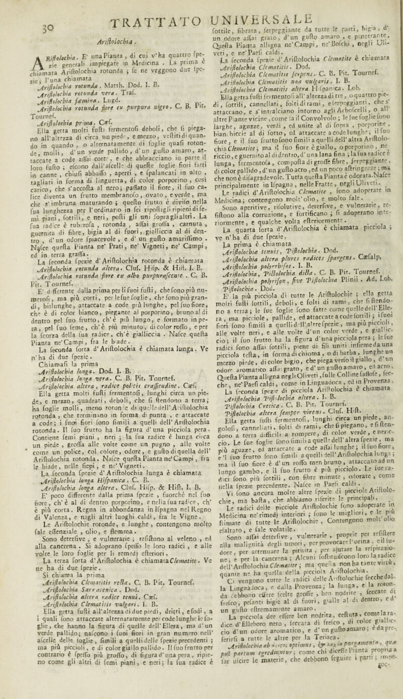 3° Ariflolocbia . UNIVERSALE Cottile, fibrata, ferpeggiante da tutte le parti, big’* » d un odore aftai grato, d“un gufto amaro , e penetrante. Quella Pianta alligna ne’Carapi, ne’Bofchi, negli Uli- Anrfolochia. E' una Pianta, di cui v'ha quattro fpe- zie generali impiegate m Medicina . La prima c chiamata Apiftolochia rotonda ; fe ne veggono due lpe- ziej Luna chiamata grillo lochi « rotunda. Matth. Dod. I. B. Ariflolocbia rotunda ver*. Trai. Ariflolocbia fantina. Lugd. „Ariflolocbia rotunda fiore ex purpura negro, C. B. in. Tournef. .Ariflolocbia pr'ma. Carf. , _ . Elia getta molti furti fermento!! deboli, che fi piega¬ no all’altezza di circa un piede, e mezzo, vertiti di quan¬ do in quando , o alternatamente di foglie quafi roton¬ de, molli, d’ un verde pallido, d’un gufto amaro, at¬ taccate a code affai corte, e che abbracciano in parte il loro furto ; efeono dall’afcelleidj quelle foglie fiori fatti in canne , chiufi abbaffo , aperti , e fpalancati in alto , tagliati in forma di linguetta, di color porporino , così carico, che s’accorta al nero; pafTato il fiore, il fuo ca¬ lice diventa un frutto membranofo, ovato, e verde, ma che s’imbruna maturando ; quello frutto è divifo nella fua lunghezza per l’ordinano in fei riportigli ripieni di Te¬ mi piani, fotti! i, e neri, porti gli unì fopra gli altri. La fua radice è rub.rofa , rotonda , affai graffa , carnuta , guernita di fibre, bigia al di fuori, gialliccia al di den¬ tro , d’un odore {piacevole , e d’ un gufto amariffimo . N^fce quefta Pianta ne’ Prati, ne’ Vigneti, ne’ Campi, ed7in terra graffa. La feconda fpezie d’Arirtolochìa rotonda è chiamata vAriflolocbia rotunda altera> Ciuf. Hifp. & Hill. I. B. ^trflolochia rotunda flore ex albo purpurafeente . C. 13. Pit. Tournef. E’ differente dalla prima per li Tuoi furti, che fono più nu¬ meraci, ma più corti, per le Tue foglie , che fono più gran¬ di, bislunghe, attaccate a code più lunghe, pel fuo fiore, che è di color bianco, piegante al porporino, bruno al di dentro pel fuo frutto, eh’è più lungo, e formato in pe¬ ra , pel fuo Cerne, eh’è più minuto, di color roffo, e per la feorza della fua radice, ch'è gialliccia . Nafce quella Pianta ne’Campì, fra le bade. La feconda forta d’Ariftolochia è chiamata lunga. Ve n' ha di due fpezie . Chìamafi la prima Ariflolocbia longa. Dod. I. B. uAriflolocbia longa vera. C. B. Pit. Tournef. Ariflolocbia altera , radice poi’cis craffltudine. CspL Ella getta molti furti fermentofì, lunghi circa un pie¬ de, e mezzo, quadrati, deboli, che fi (tendono a terra; ha foglie molli, meno roron ’e di quelle dell’Arirtolochìa rotonda , che terminano in forma d’ punta , e attaccate a code; i Cuoi fiori fono fienili a quelli dell’Ariftolochia rotonda. Il fuo frutto ha la figura d’una picciola pera. Contiene Temi piani , neri ; la fua radice è lunga circa un piede , graffa alle volte come un pugno , alle volte * come un polìce, col colore, odore, e gufto di quella dell’ Ariftolochia rotonda. Nafce quefta Pianta ne4Campi, fra le biade, nelle fiepi , e ne'Vigneti. La feconda fpezie d’Ariftolochia lunga è chiamata Ariflolocbia longa Hifpanica . C. B. Ariflolocbia longa altera. Club Hifp. & Hift. I. B. E’ poco differente dalla prima fpezie , fuorché nel fuo fiore, ch’è al di dentro porporino, e nella fua radice, eh’ c più corta. Regna in abbondanza inlfpàgna nel Regno di Valenza, e negli altri luoghi caldi, fra !c Vigne. Le Ariftolochie rotonde, e lunghe , contengono molto fale eftenziale , olio, e flemma. Sono deterlive , e vulnerarie ; refiftono al veleno , ed alla cancrena . Si adoprano fpelfo le loro radici , e alle volte le loro foglie per li remedj efteriori. La terza forta d’Ariftolochia c chiamataClematite. Ve ne ha di due fpezie. Si chiama la prima Ariflolocbia Clematitit retta. C. B. Pit. Tournef. Ariflolocbia Sarracenica. Dod. Ariflolocbia altera radice tenui. Caef. Ariftolochia Clematitit vu/gart. I. B. Ella getta fufti all’ altezza di due piedi, dritti, e Codi, a i quali fono attaccate alternatamente per code lunghe le fo¬ glie , che hanno la figura di quelle dell’EIlera, ma d' un verde pallido; nafeono i Cuoi fiori in gran numero nell’ afcelle delle foglie, fiutili a quelli delle fpezie precedenti ; ma più piccioli, e Ji color giallo pallido. Il fuo frutto per contrario é fpelfo più graffo, di figura d’una pera , ripie¬ no come gli altri dì Temi piani, e neri; la fua radice è veti, e ne’Paefi caldi. La feconda fpezie d* Ariftolochia C/ematite e chiamata Ariflolocbia C/cmatitis. Dod. Ariflolocbia Clematitit ferpens. C. B- Pit. Tournef. Ariflolocbia Clematitit non vulgarit. I. B. Ariflolocbia Clematitit altera Hifpanica. Lob. Ella getta fufti fermentofi all’ altezza di tre , o quattro p e¬ di, Cottili, cannellati, folti di rami, e ferpeggianti, che s attaccano, e s’intralciano intorno agli Arbofcelli , o all altre Piante vicine, come fa il Convolvolo ; le fue foglie fono larghe, aguzze, verdi , ed unite al di Copra , porporine , biatuhiccie al di Cotto, cd attaccate a code lungh ' ; 1 ' 'u ° fiore, e il fuo frutto fono Cimili a quelli dell’ altra Ariftolo¬ chia Clematite ; ma il fuo fiore è giallo, o porporino, ne^ rìccio, e guernitoal dì dentro, d’una lana fina ; la fua radice e lunga, fermentofa, comporta di graffe fibre, ferpeggiante, di color pallido, d’un gufto acro , ed un poco aftrmgente ; che non è difagradevole. Tutta quella Pianta e odorata.Na.ee principalmente in Ifpagna , nelle Fratte , negli Uliveti. Le radici d’Ariftolochia Clematite , fono adoperate in Medicina; contengono moli’olio, e molto fale. Sono aperìtìve, rifolutive, deterfive, e vulnerarie, r. fiftono alla corruzione, e fortificano ; fi adoperano in te riormente, e qualche volta erteriormente. La quarta Certa d’Ariftolochia è chiamata piccola ; ve n’ha di due fpezie. La prima è chiamata Ariftolochia tenuìs, Tiflolochia. Dod. Ariflolocbia altera plures radices fpargens. Caclalp, Ariflolocbia polyrrbifos. I. B. Ariflolocbia, Vitlolocbia ditta, C. B. Pir. Tournef. Ariftolochia polyrifon, five Tiflolochia Plinii . Ad. Lob, Tiflolochia. Dod. . E’ la più picciola di tutte le Ariftolochie ; ella getta molti fufti lottili, deboli, e folti di rami, che h [tendo¬ no a terra; le fue foglie fono fatte comequelledell blle- ra, ma picciole, pallide, ed attaccate a code lottili ; uuoi fiori fono Amili a quelli dfll’.altrefpezie , ma piu piccioli, alle volte neri, e alle volte d’un color verde , e guaiuc¬ cio; il fuo frutto ha la figura d’una picciola pera ; le lue radici fono affai lottili, piene ai fili uniti infiemedauna picciola teda, in forma dì chioma , odi barba, lunghe un mezzo piede, di color bigio, che piega verlo fl giallo , d un odor-' aromatico affa'grato, ed’un gufto amaro , er acro , Quefta Pianta alligna negli Oh veti, fulle Colline faflofe, ec- che , ne’ Paefi caldi, come in Linguadoca , ed in Provenza . La f-conda fpezie di picciola Ariflolochia e chiamata Ariflolocbia Tifi locbia altera. I. B. Tiflolochia eretica. C. B. Pit. Tournet. Tiflolochia altera femper virens. Ciuf. Hdt. Ella getta furti fermentofi, lunghi orca un piede, an- golofì, cannellati, folti d. rami, che fi piegano, efiften- dono a terra difficili a rompere, di color verde, e neric¬ cio. Le fue foghe fono fumi) a quel! ■ dell altra fpezie, ma «iù aguzze, ed attaccate a rode affai lunghe; illuohore, e’1 fuo frutto fono limili a quelli dell’ Ariftolochia lungi ; ma il fuo fiore è d’un roffo men bruno , attaccato ad un lungo gambo, e il fuo frutto è più picciolo. Le luera dici fono più lottili , con fibre minute , odorate , coni nella fpezie precedente Nafce in Paefi caldi ila inezie piacuum.. + ... ..ni Vi fono ancora moire altre fpezie di piccioleArilto.o- hie, ma balla, che abhiamo riferite le principali. Le radici delle picciole Ariftolochie fono adoperate m Medicina ne’rimedi interiori ; fono le migliori, e le p;u limate di tutte le Ariftolochie , Contengono moli olio (aitato, e fale volatile. . rn „ Sono afTai deterfive , vulnerarie , proprie per refiftere dia malignità degli umori, per provocare l’orma , eillu- lore, per attenuare la pituita, per ararare la re P'razio- re e per la cancrena ; Alcuni foftituifcono loro la radice lell’Ariftolochia C/ematite ; ma quefta non ha tante virtù , mante ne ha quella della picciola Ariftolochia. Ci vengono tutte le radici delle A'iftolochie Cecche dal- a LinguaJoca, e dalla Provenza; la lunga, e la roton¬ da cebbono etere feelte graffe , ben npdnte , leccate di ùefeo, pefanti bigie al di fuori, gialle al di dentro, ci un gufto eftremamcnte amaro. La picciola dee etere ben nodrita, ceftuta, conte la ra¬ dice d’Elleboro nero , leccata di frelco , di color giallic¬ cio d’un odore aromatico, e d'un gufto amaro ; e da pre¬ ferirci a tutte le altre per la Teriaca. Ariflolocbia ab rn optimus , isr •“ purgamene* ? qua; doli partum egrediuntur ; come chi dicerie Pianta propnaa far ufeire le materie, che debbono leguire i parM ; mine-