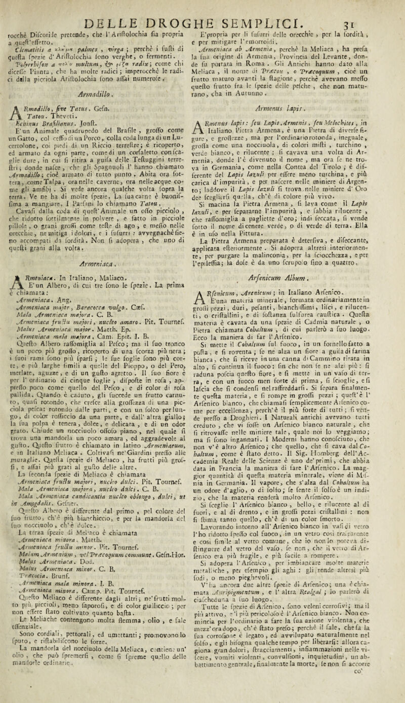 rocche DifcoriJe pretende, a quefi’effetro. ClematUis a palmes , vìrga ; perchè i fu Ri quella fpezie d’ AriRoiochìa fono verghe, o fermenti. Vcfyrrhifon a ire* u multum, {3* p<Ta radìx ; come chi diceffe Pianta, che ha molte radici; imperocché le radi¬ ci dalla picn'ola Arillolochia fono affai numerote . Arma dii lo. ARmadìllo, five Tatus. Gefn. Tatou. Theveti. Ecbinus Brajilianus. JonR. E’un Animale quadrupedo del Braille , groffo come unGatto, col ceffo di un Porco, colla coda lunga di un Lu¬ certolone, coi piedi di un Riccio terrellre; è ricoperto, ed armato da ogni parte, comedi un corfaletto con ma¬ glie dure, in cui fi ritira a guifa delle TeRuggini terre- fin ; donde nafee , eh gli Spaglinoli 1’ hanno chiamato Mr ma dillo ; cioè armato di tutto punto . Abita ora lot¬ terà, come Talpa, ora nelle caverne, ora nelle acque co¬ me gli amfibj . Si vede ancora qualche volta lopra la terra. Ve ne ha di molte fpezie, La fuacarne è buonif- fima a mangiare, I Paefam lo chiamano Tatou. Cavali dalla coda di quell’Animale un offo picciolo , che ridotto tortilmente in polvere , e fatto in piedoie pillole , o grani grofifi come tefte di ago , e meffo nelle orecchie, ne mitiga i dolori, e i fufurri : avvegnaché fie- no accompati da fordità. Non fi adopera , che uno di quelli grani alla volta. Armeniaea. Rmeniaca. In Italiano, Maliaco. E’un Albero, di cui tre fono le fpezie. La prima è chiamata: ^Armeniaca. Ang. jLrmeniaca major, Baracocea vulgo. Csef. Mala jLrmeniaca major a. C. B. ^Armeniaca frutta majori, nucleo amaro. Pit. Tournef. Malus jlrmen'taca major. Match. Ep. Mrmeniaca mala majora, Cam. Epit. J. B. Quello Albero raffomiglia al Pefco; ma il fuo tronco è un poco più grofito, ricoperto di una feorza più nera ; 1 fuoi rami fono più fparfi ; le fue foglie fono più cor¬ te, e più larghe ùmili a quelle del Pioppo, o del Pero, merlate, aguzze, e di un guflo agretto. Il fuo fiore è per 1’ ordinario di cinque foglie , dilpofte in. rofa , ap¬ presto poco come quello del Pefco , e di color di rofa pallida. Quando è canuto, gli luccede un frutto carnu¬ to, quafi rotondo, che crefce alla groffezza di una pic- cìola pefea: rotondo dalle partì, e con un folco per lun¬ go, di color roflìccio da una parte, e dall’ altra giallo; la tua polpa c tenera, dolce, e delicata , e di un odor grato. Chiude un nocciuolo olfofo piano , nel quale fi trova una mandorla un poco amara , ed aggradevole al gufto. Quello flutto è chiamato in latino ^Armen'iaeum, e in Italiano Meliaca . Coltivali ne’Giardini preffo alle muraglie. Quella fpezie di Meliaco , ha frutti più grot- fi, e affai più grati al gufto delle altre. La feconda fpezie di Meliaco è ch'amata .Armeniaca frutta majori, nucleo dulcì. Pit. Tournef. Mala Mrmsniaca major a,, nucleo dulcì. C. B. Mala Mr me nuca candicantia nucleo oblungo , dulcì, ut in .Amygdalìs. Gefner. Quefto Albero è differente dal primo , pel colore del fuo frutto, eh’è più bianchiccio, e per la mandorla del fuo nocciuolo, eh’è dolce. La terza fpezie di MePaco è chiamata MLnneniaca minora. March. Mrmenìaca frutta mmor. Pit. Tournef. Mal'im Mrmenium , vdVrxcoquum communi. Gefn.Hor. filalus uInneniaea. Dod. Malus JLrmeniaca minor. C. B, Treccocia. Brunf. .Armcniaca mala minora. 1. B. sfarne ni ac a minora. Camp. Pit. Tournef. Quello Meliaco è differente dagli altri; ne’frutti mol¬ to più piccioli, meno faporofi, e di color gialliccio ; per non effere flato coltivato quanto balla. Le Meliache contengono molta flemma, olio , e Cale effenziale. Sono cordiali, pettorali, ed umettanti; promovono lo fputo, e rillabiiifcono le forze. La mandorla del nocciuolo della Meliaca, contiene un’ olio , che può fpremerfi , come fi fpreme quello delle mandorle ordinarie. 3* E’propria per li fufurri delle orecchie , per la (ordita , e per mitigare l’emorroidi. ^Armcniaca ab ^Armenia, perchè la Meliaca , ha prefa la fua origine di Armenia, Provincia del Levante, don¬ de fu poirata in Roma . Gli Antichi hanno dato alla Meliaca , il nome di Treecox , 0 Treccoquum , cioè un frutto maturo avanti la Ragione, perchè avevano meffo quello frutto fra le Ipezie delle pelche , che non matu¬ rano, cha in Autunno. Armentis lapis. Allmenus lapis : feu Lapis .Armenti , feu Mclochìtes , in Italiano Pietra Armena, è una Pietra di diverfe fi¬ gure, e groflezze, ma per l’ordinario rotonda, ineguale, grolla come una nocciuoia, di colori miRi , turchino , verde bianco, e rilucente ; lì cavava una volta di Ar¬ menia, donde l’è divenuto il nome , ma ora fe ne tro¬ va in Germania, come nella Contea del Tirolo ; è dif¬ ferente del Lapis lazuli per effere meno turchina, e più carica d’impurità, e per nafeere nelle miniere di Argen¬ to; laddove il Lapis lazuli fi trova .nelle miniere d' Oro dee fcegiicrlì quella, ch’è di colore più vivo. Si macina la Pietra Armena , fi lava come il Lapis lazuli, e per fepararne l’impurità , e fabbia rilucente , che raffomiglia a pagliette d’oro; indi leccata, fi vende fotto il nome di cenere verde, o di verde di terra. Ella è in ufo nella Pittura. La Pietra Armena preparata è deterlìva, e difettante, applicata efieriormente . Si adopera altresì interiormen¬ te, per purgare la malinconia, per la fciocchezza, e per l’epileflìa; ia dole è da uno fcrupolo fino a quattro, Arfenicum Album. I - * • -i ARfenìcum, jLrcnicum ; in Italiano Arfenico. E'una materia minerale, formata ordinariamente in grofli pezzi, duri, pefanti, bìanch'flìmi, li lei, e rilucen¬ ti, o criftallini, e di foRanza fulfurea rauRica . QueRa materia è cavata da una fpezie di Cadmia naturale , o Pietra chiamata Cohaltum , di cui parlerò a fuo luogo. Ecco la maniera di far I’Arfenico. Si mette il Cohaltum fui fuoco, in un fornello fatto a poRa, e fi roventa ; fe ne alza un fiore a guila di farina bianca, che fi riceve in una canna d'Cammino ri-ata in alto, fi continua il fuoco: fin che non le ne alzi più : fi raduna pofeia quello fiore, e fi mette in un vafo di ter¬ ra, e con un fuoco men forte di prima, fi feioglie, eli lafcia che fi condenfi nel raffreddarfi. Si fepara finalmen¬ te quella materia, e fi rompe in groffi pezzi ; quell’è P Arfenico bianco, chechiamafi femplicemente A Reifico co¬ me per eccellenza, perch’è il più forte di tutti; riven¬ de preflo a Droghieri. I Naturali antichi avevano tutti creduto , che vi foffe un Arfenico bianco naturale , che fi ritrovaffe nelle miniere tale, quale noi lo veggiamo; ma fi fono ingannati. I Moderni hanno conofciuto, che non v’è altro Arfenico; che quello, che fi cava dal Co¬ haltum, come è Rato detto. Il Sig. Homberg dell’Ac¬ cademia Reale delle Scienze è uno de’primi, che abbia data in Francia la maniera di fare I’Arfenico. La mag¬ gior quantità di queRa materia minerale, viene di Mtf- nia in Germania. 11 vapore, che s’alza dal Cohaltum ha un odore d’aglio, o di folfo; fe fente il lolfo è un indi¬ zio, che la materia renderà molto Arfenico. Si fceglie P Arfenico bianco, bello, e rilucente al di fuori, e al di drento , e in groffi pezzi criRallini : non fi Rima tanro quello, ch’è di un color fmorto. Lavorando intorno all’Arfenico bianco in validi vetro l’ho ridotto ipeffo col fuoco, in un vetro cosi trai carente e cosi fimi le al verro comune, che io nonio poteva di- Ringuere dal vetro del vafo, fe non, che il vetro di Ar¬ fenico era più fragile, e p'ù facile a rompere. Si adopera l’Arfenico, per imbiancare mo'te materie metalliche , per efempio gli aghi : gli rende altresì più fodi, o meno pieghevoli. V’ha ancora due aitre fpezie di Arfenico; una è chia¬ mata Murìpìgmcntum , e 1’ altra Rcalgal ; io parlerò di ciafcheduna a tuo luogo. Tutte le fpezie dì Arfenico, fono veleni ccrrofivi; ina il piùattivo, e ’i più pericolato è ì’Arfenico bianco. Non co¬ mincia per l’ordinario a fare la fua azione violenta, che mezz’ora dopo, ch’è Rato prefo; perchè il fale, che fa la fua corrofione è legato, ed avvilupato naturalmente nel folfo, egli bifogna qualche tempo per liberarli: allora ca¬ giona gran dolori, (tracciamenti, infiammazioni nelle vi- feere, vomiti violenti, convulfioni, inquietudini, un ab¬ battimento generale, finalmente la morte, le non fi accorre co’ DELLE DROGHE SEMPLICI che F Artfiolochia fia propria di