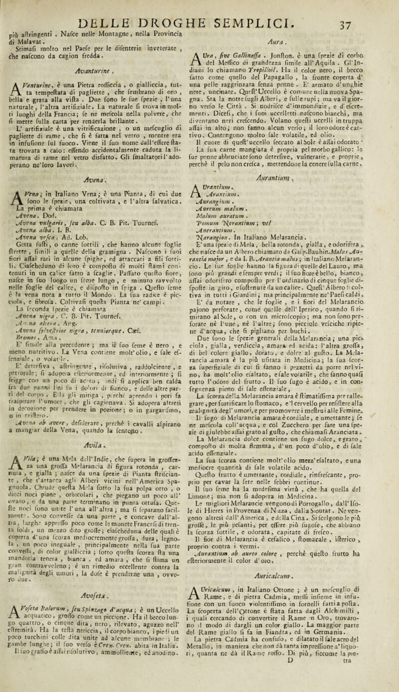 Aura. più afiringenti . Nafce nelle Montagne, nella Provincia di Malavat. Stimali molto nel Paefe per le difenterie inveterate , che nafcono da ca'gion fredda. Avantunne . AVanturine, c una Pietra rofficcia , o gialliccia, tut¬ ta tempeftata di pagliette , che fembrano di oro , bella e grata alla villa . Due fono le fue fpezie , Puna naturale, l’altra artifiziale, La naturale fi trova in mol¬ ti luoghi della Francia; fe ne mefcola nella polvere, che fi mette fulla carta per renderla brillante. L’ artifiziale è una vitrificazione , o un mefcuglio di pagliette di rame , che fi è fatta nel vetro , mentre era in infufione fui fuoco. Viene il fuo nome dall’eflcre fia¬ ta trovata a calo: effendo accidentalmente caduta la li¬ matura di rame nel vetro disfatto. Gli fmaltatori l’ado¬ perano ne’loro lavori. Avena. AVena; in Italiano Vena; è una Pianta, di cui due fono le fpezie, una coltivata , e l’altra falvatica. La prima è chiamata lAvena. Dod. jlvena vulgaris, Jeu alba. C. B. Pit. Tournef. tAvena alba. I. B. civetta vefca. Ad. Lob, Getta fufii, o canne lottili , che hanno alcune foglie Uretre , fintili a quelle della gramigna . Nafcono i Cuoi fiori affai rari in alcune fpighe, ed attaccati a fili fotti- li. Ciafeheduno di loro è comporto di moiti fiami con¬ tenuti in un calice fatto a fcaglie. Paflato quello fiore, nafce in fuo luogo un teme lungo , e minuto ravvolto nelle foglie del calice, e difpofio in fpiga . Quello teme è la vena nota a tutto il Mondo . La fua radice è pio¬ emia, e fibrofa. Coltivali quella Pianta ne’campi. La faconda fpezie è chiamara ■Avena nigra . C. B. Pit. Tournef. tArKna alieta. Ang. ...Avena fy/vejtrìor nigra, tenuiorque. Caef. Rromot. Ama. E’ limile alla precedente ; ma il fuo feme è nero , e meno nutritivo. La Vena contiene molt’olio, e Tale ef- fenzìale, o volarle. E’ deterfiva , aftringenre , rifolutiva , raddolcente , e pettorale; fi adopera efienormence, ed interiormente; fi frigge con un poco di ac ro ; indi fi applica ben calda fri due panni Imi fu i do'ori di fianco, e delle altre par¬ ti del corpo . E la gli minga , p:rchè aprendo ì pori fa rraipirare l’umore, che gli cagionava. Si adopera altresì in decozione per prendere in pozione; o in gargarifmo, o in crifiero. Avena ab avere, defiderare , perchè ì cavalli afpirano a rnang-ar della Vena, quando la fentojio. Avila... A Vi lai è una M-fia dell' Indie, che fupera in groffez- za una grolfa Melarancia di figura rotonda , car¬ nuta , e gialla ; nafce da una fpezie di Pianta ftrifeian- te , che s’attacca agli Alberi vicini nell’America Spa¬ gnola. Chiude quella Mela fotto la fua polpa otto , o dieci noci piane , oracolari , che piegano un poco all* ovato, e da una parte terminano in punta ottufa. Que¬ lle noci fono umte Luna all'altra; ma fi feparano facil¬ mente. Sono convelle da una parte , e concave dall’al¬ tra, larghe appreffo poco come le monete Francefi di tren¬ ta Ioidi, un mezzo dito grolle; ciafeheduna delle quali è coperta d’una feorza mediocremente grolla, dura, legno- fa , uri poco ineguale , principalmente nella fua parte convelTa, di color gialliccia ; fotto quella feorza (la una mandorla tenera , bianca , ed amaia , che fi ftima un gran contravveleno ; è un rimedio eccellente contra la malignità degli muori , la dofe è prenderne una , ovve¬ ro due. Avofeta. AVofeta Italorum , [cu Spinzago d'acqua ; è un Uccello acquatico, grorto come un piccione. Ha il becco lun¬ go quattro, o cinque dita, nero, rilevato, aguzzo nell’ efiremita. Ha la tefla nericcia, il corpo bianco, i piedi un poco turchini colle dita unite ad alcune membrane ; le gambe lunghe; il fuo verfo cCrex.Crex. abita in Italia. Il tuo grado è affai rifolurivo, ammolliente, ed anodino. AUra, five Gallinajfa . Jonflon. è una fpezie di corba del Medico di grandezza fimile all’Aquila. Gl’In¬ diani lo chiamano Tropìlloil. Ha il color nero, il becco fatto come quello del Papagallo , la fronte coperta d’ una pelle raggrinzata fenza penne . E’ armato d’unghie nere, uncinate. Quell’Uccello è comune nella nuova Spa¬ gna . Sta la notte lugli Alberi, e fuiIe rupi ; ma va il gior¬ no verfo le Città . Si nodrifee d’immondizie, e d'efere- menti. Dicefi, che i fuoi uccelletti nafcono bianchi, ma diventano neri crefeendo. Volano quelli uccelli intruppa affai in alto; non fanno alcun verfo; il loro odore è cat¬ tivo. Contengono molto fale volatile, ed olio. Il cuore di quell’uccello feccato al Sole è affai odorato * La fua carne mangiata è propria pel morbo gallico : le fue penne abbruciate fono deterfive, vulnerarie, e proprie, perchè il pelo non crefca , mettendone la cenere fulla carne, Aurantimi „t Vrantìum, Arantium. Aurangium . Aureum mainiti, Malum auratum . Tornum TS^erantium ; vel Aneranttum. Tslarangion. In Italiano Melarancia. E’una Ipezie di Mela , bella rotonda , gialla, e odorifera », che nafce da un Albero chiamato da Gafp.Bauhin.Md/».f Au- rantia major , e da I. B. granfia màlus ; in Italiano Melaran¬ cio. Le lue foglie hanno la figura d> quelle del Lauro , ma fono più grandi e femprc verdi ; il fuo fiore è bello, bianco, affai odorifero comporto per L ordinario di cinque foglie di- fpofte in giro, elofienme da un calice. Quell’ Albero fi col¬ tiva in tutti i Giardini; ma principalmente ne’Paefi caldi, E’ da notare , che le foglie , e i fiori del Melarancio pajono perforate, come quelle dell’Iperico, quando fi ri¬ mirano al Sole, o con un microfeopio ; ma non fono per¬ forate nè Lune, nè Laltre; fono prcciole vefciche ripie¬ ne d’acqua, che fi pigliano per buchi. Due fono le fpezie generali della Melarancia ; una pie* dola, gialla, verdiccia, amara ed acida: l’altra grolfa, di bel colore giallo, dorato, e dolce al gufio. La Mela¬ rancia .amara è la più ufitata in Medicina; la fua feor¬ za fuperfiziale di cui fi fanno i pezzetti da porre nel vi¬ no, ha molt’olio elaltato, e fale volatile , che fanno quafi tutto l’odore, del frutto . Il fuo fugo è acido, e in conr feguenza pieno di (ale effenziale, La feorza della Melarancia amara è fiimatiffima per ralle¬ grare ,per fortificare lo filomaco, e’1 cervello per refifiere alla malignità degl’ umori, e per promovere i meftrui alle Femine, li fugo diMelarancia amara è cordiale, e umettante; fe ne mefcola coll’acqua, e col Zucchero per fare unalpe- zie di giulebbe aitai grato al gufilo, che chiamali Aranciata . La Melarancia dolce contiene un fugo dolce, e grato > comporto di molta flemma, d’un poco d’olio, e di fale acido effenziale. La fua feorza contiene molt’olio mezz’efaltato, e una mediocre quantità di fale volatile acido. Quello frutto è umettante, cordiale, rinfrefeante, pro¬ prio per cavar la fete nelle febbri continue. Il fuo feme ha la medefima virtù , che ha quella del Limone; ma non fi adopera in Medicina. Le migliori Melarancie vengonodi Portogallo , dall’ Ito¬ le di Hieres in Provenza diN zza, dalia Siourat. Ne ven¬ gono altresì dall’America , edellaCina. Si feelgono le più groffe, le più pefanti, per effare più fugofe, che abbiano la fcoTza fotti le, e odorata, capitate di frefeo. Il fior di Melarancia è cefalico , rtomacale , ifierico , proprio contra i vermi. Aurantium ab aureo colore , perchè quello frutto ha efteriormente il color d’oro. Aur ic alcuni■. A Urie alcum , in Italiano Ottone ; è un mefcuglio di Rame, e di pietra Cadmia, meflì infieme in infu¬ fione con un fuoco violentiffimo in fornelli fatti a porta. La feoperta dell'Qctofie è fiata fatta dagli Alch mirti , i quali cercando di convertire il Rame n Oro, trovaro¬ no il modo di dargli un color giallo. La maggior parte del Rame giallo fi fa in Fiandta, ed in Germania. La pietra Cadmia ha confufo, e dilatato il fale acro del Metallo, in maniera che non dà tanra impreffione a’liquo¬ ri, quanta ne dà il Rame rodo. Di più, ficcome la pie- D tra