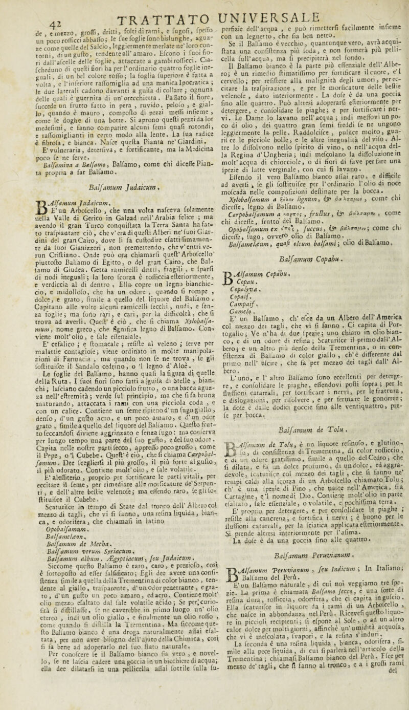 de , e mezzo, grotti, dritti, folti di rami, e fugofi, fpetto un poco rofficci abballo ; le fue foglie fono bislunghe, aguz¬ ze come quelle del Salcio, leggiermente merlate ne’ loro con¬ torni, di un guflo, tendenteall’amaro. Efcono i Cuoi fio¬ ri dali’afcelle delle foglie, attaccate a gambirofficci. Cia- febeduno di quelli fiori ha per l'ordinario quattro foglie ine¬ guali, di un bel colore rotto; la foglia fuperiore è fatta a volta , e l’inferiore raffomiglia ad una manica Ipocratica ; le due laterali cadono davanti a guila di collare ; ognuna delle quali è guernita di un’orecchietta. Pattato il fiore, fuccede un frutto fatto in pera , ruvido, pelolo , e gial¬ lo, quando è mauro , comporto di pezzi metti infieme , come le doghe di una botte. Si aprono quelli pezzi da lor medefimi, e fanno comparire alcuni Temi quali rotondi, e ralTomiglianti in certo modo alla lente. La lua radice è fibrofa, e bianca. Nafee quella Pianta ne'Giardini. E’vulneraria, deterfiva, e fortificante, ma la Medicina poco fe ne ferve. Balfamina a Balfamo, Ballamo, come chi dicclfe Pian¬ ta propria a far Balfamo. Balfamum Judaicum, BJllfamum Judaicum, E’un Arbofcello , che una volta nafeeva fedamente nella Valle di Gerico in Galaad nell’Arabia felice ; ma avendo il gran Turco conquiftata la Terra Santa ha fat« to tralpìaotare ciò, che v’ era di quelli Alberi ne’luoi Giar¬ dini del gran Cairo, dove li fa cuftodire efattiffimamen- te da luoi Gianizzeri , non premettendo, che v’entri ve¬ rmi Criftiano. Onde può ora chiamarli quefl’Arbolcello piuttofto Ballamo di Egitto, o del gran Cairo, che Bal¬ lamo di Giudea. Getta ramiceli! dritti, fragili , e Iparfi di nodi ineguali; la loro feorza è rofficciaefleriormente, e verdiccia al di dentro. , Ella, copre un legno bianchic¬ cio, e midollofo, che ha un odore , quando fi rompe , dolce, e grato, fi ni i 1 e a quello del liquoie del Balfamo. Capitano alle volte alcuni ramicelli lecchi , nudi, e fen- za foglie; ma fono ra,ri, e cari, per la difficoltà, cheli trova ad averli. Quell’ è ciò , che fi chiama Xylobalfa- mum, nome greco, che lignifica legno di Ballamo. Con,-* viene molt’olio, e Tale effenziale, E’ cefalico ; e flomacale ; refirte al veleno ; ierve per malattie contagiofe; viene ordinato in molte manipola¬ zioni di Farmacia , ma quando non fe ne trova , fe gli loflituifce il Sandalo cedrino, o ’l legno d’Aloè.. Le foglie del Balfamo, hanno quali la figura di quelle dellaRuta, I fuoi fiori fono fatti a ;guifa di Stelle , bian¬ chi; lafciano cadendo un picciolo frutto, o una bacca aguz¬ za nell’eftremità ; verde fui principio, ma che fi fa bruna maturando, attaccata i rami con una picciola coda , e con un calice. Contiene un femeripienod’un fugogixllo , denfoj d’un gufilo acro, e un poco amato, e cV un odor grato, fimilea quello del liquore del Ballatilo. Quefto frut¬ to leccandoli diviene aggrinzato e fenzaiugo: macor.ierva per lungo tempo una parte del fuo guflo, edelfuoodore. Capita nelle noftre parti fecco, apprettò poco groffo , come il Pepe, o *1 Cubebe. Quefl' è ciò, che fi chiama Catpobal- famum. Dee fceglierfi il più groffo, il più forte al gufto, il più odorato. Contiene mole’olio, e Tale volatile. E’a lettitene , proprio p:r fortificare le parti vitali, per eccitare il feme, per rimediare allemo llcature de’Serpen¬ ti , e dell’altre bellie velenolc; ma effendo raro, (egliLo¬ flituifce il Cubebe. Scaturifce in tempo di State da! tronco dell Albero col mezzo di tagli, che vi fi lanno, una retina liquida, bian¬ ca, e odorifera, che chumafi in latino Opoba/famum. Balfamc Leon* Balfamum de Mecha. Balfamum verum Syrìacum, Balfamum album. /Egyptiacum . feu Judaicum. Siccome quello Ballamo è raro, caro, e preziofo, cosi è lottopofto ad effer falfificato; Egli dee avere unaconfì- flenza finv.le a quella della Tremcntinadi color bianco , ten¬ dente al giallo, trasparente, d’un odor penetrante , e gra¬ to , d’un guflo un poco amaro, ed acro. Contiene molt’ olio mezzo efaltato dal tale volatile acido ; Se per^curio- fità fi diftillalfe, T ne caverebbe in primo luogo un’ olio etereo , indi un olio giallo , e finalmente un olio roffo , come quando fi ciflilla la Trementina. Ma ficcomeque¬ llo Ballamo bianco è una droga naturalmente, aliai efal- tata, per non aver bìfogno dell’ajuto della Chimica , così fi fa bene ad adoperarlo nel tuo flato naturale. Per conofcere le il Balfamo bianco fis vero , e novel¬ lo, le ne lafcia cadere una goccia in un bicchiere di acqua; ella dee dilatarf» in una pelliccila affai fottile Culla lu- UNIVERSALE perfizie dell’acqua , e può rimetterfi facilmente infieme con un legnerto, che fia ben netto. Se il Ballamo è vecchio, quantunque vero, avraacqut- flata una confidenza più loda, e non formerà piu pelli- cella full’acqua, ma fi precipiterà nel fondo. Il Ballamo bianco è la parte più effenziale dell’Albe¬ ro; è un rimedio flimatiffimo per fortificare il cuore, e l cervello; per refirtere alla malignità degli umori, perec- citare la trafpirazione , e per le morficature delle beute velenofe , dato interiormente . La dole è da una goccia fino alle quartro. Può altresì adoperarli erteriormente per detergere, e conlolidare le piaghe; e per fortificarci ner¬ vi. Le Dame lo lavano nell’acqua; indi melfoviun po¬ co di olio , dei quattro gran Temi freddi fe ne ungono leggiermente la pelle. Raddolcire , puliice molto, gua¬ rii ce le picciole bolle, e le altre inegualità del vilo. Al¬ tre lo diffòlvono nello fpirito di vino, o nell’acqua del¬ la Regina d’Ungheria; indi mefqolano la diffoluzione in molt’acqua di chiocciole, o di fiori di fave per fare una Ipezie di latte verginale, con cui fi lavano. Effendo il vero Ballamo bianco affai raro, e difficile ad averli , fe gli foftituifee per l’ordinario l'olio di noce mofeada nelle compofizioni deftinate per la bocca. Xylobalfamum a %ò\ov lignum, & /Sa Xc-a^ov , come chi diceffe, legno di Balfamo. Carpobalfamum a x-zgiro; , frufius, & /SaXa-apoy , tome chi diceife, frutto'del Ballamo. Opobalfamum ex l7r°\ , fuccus, O* &aX<r«^^; come chi diceffe, fugo, ovvero olio di Balfamo* Balfamelceum, quaft oleum balfamiolio di Balfamo, Balfamum Copabu. ^iìfamum Copdbu. Ccpau. Copalyva . Copaif. Campaif. Camelo . E’ un Balfamo , eh’ efee da un Albero dell’America col mezzo dei tagli, che vi fi fanno . Ci capita di Por¬ togallo; Ve n’ha di due Ipezie; uno chiaro in olio bian¬ co, e di un odore di relìna ; Scaturilce il primo dall’Al¬ bero; e un altro più denfo della Trementina, o in con- fiftenza di Baifamo di color giallo , eh’è differente dal primo nell’ ulcire , che fa per mezzo dei tagli dall’ Al¬ bero . L’uno, e P altro Balfamo fono eccellenti per deterge¬ re, e conlolidare le piaghe, elfendovi porti lopra ; per le flulfiom catarrali, per torciflc are i nervi, per le frattura, e dislogazioni, per risolvere , e per fermare le gonorree; la dole è dalle dodici goccie fino alle ventiquattro, pr.e- fe per bocca. Balfamum de Tolti. Rjtlfanuim de Tolti, è un liquore refinofo, e giurino- .o, di confidenza di Trementina, di color rotticelo, c di un. odore gratìfliuio, fintile a quello del Cedro, che fi dilata, e fa ;n dolce profumo, di un dolce., ed aggra¬ devole, Tcaturifce col mezzo dei tagli , che lì fanno ne’ tempi caldi alla scorza di un Arbolcello chiamato fo.u; eh’ è una Ipezie di Pino , che paLqe nell’America, tia Cartagine, e’1 nomedi Dio. Coniie-ie molt’olio in parte efaltato, fiale effenziale, o volatile, e pochiffìnia terra. E’ proprio per detergere, e per conlolidare le piaghe ; refillc alla cancrena, e fortifica i nervi ; è buono per le ffuffiom catarrali, per la Iciatica appi icata erteriormente, Si prende altresì interiormente per l’afima. La dole è da una goccia fimo alle quattro. Balfamum Peruvtanum. BJllfamum Teruvianum , feu lndicum ; In Italiano; Balfamo del Perù. . E’un Balfamo naturale , di cui noi veggiamo tre ipe¬ zie. La prima è chiamata Balfamo Jecco, è una torte di refina dura, rofficcia, odorffera, che ci capita inguicio. Ella Icaturifce in liquore da i rami di un Arbolceho , che nalce in abbondanza nel Perù. Ricevefi quefto ìquo- re in piccioli recipienti; ti efpone al Sole , o ad un altro calor dolce per molti giorni, affinchè un’umidità acquoia, che vi è inefcolata, 1 va pori, e la refina s’induri. La feconda è una refina liquida , bianca, odorifera , li¬ mile alla pece liquida, di cui fi parlerà nell articolo cella Trementina ; chiamafi Ballamo bianco del Perù. lice per mezzo de’ tàgli, che fi fanno al tronco, e a i grofli rami