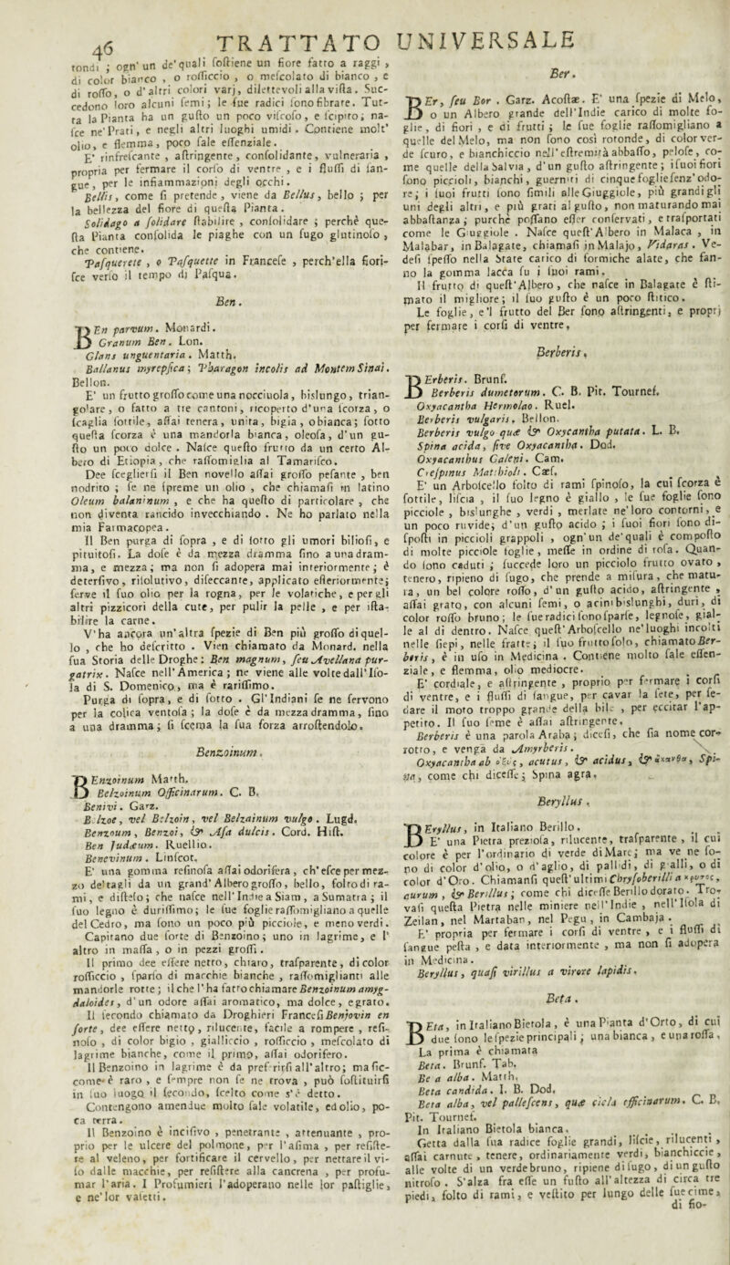 tondi ; ogn’ un de’quali foftiene un fiore fatto a raggi , di color bianco , o roflìccio , o mefcolato di bianco , e di roffo, o d’altri colori varj, dilettevoli alla vifta. Suc¬ cedono loro alcuni femi ; le fue radici lonofibrare. Tut¬ ta la Pianta ha un gufto un poco vifcofo, e fcipiro; na- fce ne'Prati, e negli altri luoghi umidi. Contiene molt’ olio, e flemma, poco Tale etfenziale. £• rinfrefcante , aftringente, confolidante, vulneraria , propria per fermare il corto di ventre , e i fluiti di fan- gue , per le infiammazioni degli occhi. Beiti s, come fi pretende, viene da Be/Ius, bello ; per la bellezza del fiore di quella Pianta. Solìvago a fotidare flabiiire , conlolidare ; perchè que- fta Pianta consolida le piaghe con un fugo giurinolo, che contiene. Tatuerete , o Tafquette in Francefe , perch’ella fiori- fce verfo il tempo dj Pafqua. Ben. BEn parvum. Monardi. Granitin Ben. Lon. Glans unguentaria . Matth. Ballanus myrepfca ; Vbaragon incoti s ad Monte m Sin al. Bellon. E’ un frutto groflo come una nocciuola , bislungo, trian- go’are, o fatto a tre cantoni, ricoperto d’una lcorza, o (caglia lottile, affai tenera, unita, bigia, obianca; fotto quefla fcorza è una mandorla b'anca, oleofa, d’un gu- ffo un poto dolce . Na(ce queflo frutto da un certo Al¬ bero di Etiopia, che raffomialia al Tamarifco. Dee fceglierfi il Ben novello affai groffò pefante , ben nodrito ; fe ne (preme un olio , che chiamali rn latino Oleum balanìnum , e che ha queflo di particolare , che non diventa, rancido invecchiando . Ne ho parlato nella mia Fatroacopea. Il Ben purga di fopra , e di lotto gli umori biliofi, e pituitofi. La dofe è da mezza dramma fino a una dram¬ ma, e mezza; ma non fi adopera mai interiormente; è deterfivo, riiolutivo, difeccanre, applicato efieriormentei ferve il fuo olio per la rogna, per le volatiche, e per gli altri pizzicori della cute, per pulir la pelle , e per ifta- biliTe la carne. V’ha ancora un’altra fpezie di Ben più groflo diquel- ]o , che ho del’ctitto . Vien chiamato da Monard. nella fua Storia delle Droghe; Ben magnum, feti Avellana pur¬ gai ri x. Nafce nell’America; ne viene alle voltedall’Ifo- Ja di S. Domenico, ma è rariffimo. Purga di fopra, e di fotto . Gl’Indiani fe ne fervono per la colica ventola; la dofe è da mezza dramma, fino a una dramma; fi fcema la fua forza arroftendoìo. Benzoinum. BEnzotnum Matth. Belzoinum Qffìcinarum. C. B, Benivi. Ga^z. B Izoe, nel Bclzoin, vel Belzainum vulgo. Lugd. Benzoum , Benzoi, is* ^Afa dulcis. Cord. Hift. Ben Judceum. Ruellio. Benevinttm. Linfcot. E’ una gomma refinofa affai odorifera , ch’efce per mez¬ zo dertazli da un grand’Alberogroffo, bello, folrodi ra¬ mi, e diftelo; che nafce nell’Incile a Siam , a Sumatra; il fuo legno è durilfimo; le lue foglie raffomigliano a quelle del Cedro, ma fono un poco p;ù picciole, e meno verdi. Capitano due forte di Benzoino; uno in lagrime, e l* altro in malia , o in pezzi groffì. Il primo dee elfere netro, chiaro, trafparente, di color rofficcio , (parlo di macchie bianche , raffomiglianti alle mandorle rotte; i 1 che l’ha fatto chiamare Benzoinum amyg- daloidet, d’un odore affai aromatico, ma dolce, egrato. li fecondo chiamato da Droghieri Francefi Benjovin en forte, dee effere nett9, rilucente, facile a rompere , refi- nolo , di color bigio , gialliccio , rofficcio , mefcolato di lagrime bianche, come il pruno, affai odorifero. 11 Benzoino in lagrime è da pref rirfi all’altro; mafie- come-è raro , e fempre non fe ne rrova , può follituirfi in [uo luogo il fecondo, (certo come s’è detto. Contengono amenJue morto fale volatile, ed olio, po¬ ca terra. Il Benzoino è incifivo , penetrante , attenuante , pro¬ prio per le ulcere del polmone, p-r l’afima , per refirte- re al veleno, per fortificare il cervello, per nettare il vi- fo dalle macchie, per refiftere alla cancrena , per profu¬ mar l'aria. I Profumieri l’adoperano nelle lor partiglie, e ne’lor valetti. UNIVERSALE Ber. BEr, feu Bor . Garz. Acoftae. E’ una fpezie di Melo, o un Albero grande deli’Indie carico di morte fo¬ glie, di fiori , e ai frutti ; le fue foglie raffomigliano a quelle del Melo, ma non fono così rotonde, di color ver¬ de feuro, e bianchiccio neii’ertremuà abbaffo, pelofe , co¬ me quelle della Salvia, d’un gufto aftringente; ifuoi fiori fono piccioli, bianchi, guernui di cinque foglie fenz'odo¬ re; i luoi frutti lono limili alle Giuggiole, più grandi gli uni degli aitn, e più grati ai gufto, non maturando mai abbaftanza ; purché poflano eflc-r confervati, e rralportati come le Giuggiole . Nafce queft'Albero in Malaca , in Malabar, inBalagate, chiamali inMalajo, Vidaras. Vc- defi ipeffo nella Stare carico di formiche alate, che fan¬ no la gomma lacca fu i luoi rami. Il frutto di queft’AJbero , che nafce in Balagate è Ri¬ mato il migliore; il fuo gufto è un poco ftitico. Le foglie, e’1 frutto del Ber fono altringenri, e propri per fermare i corfi di ventre, Berberis, BErberif. Brunf. Berberis dumetorurn. C. B. Pit. Tournef, Oxyacantba Hermolao. Ruel. Berberis vulgaris. Bellon. Berberis vulgo quae Oxycantha patata. L. B. Spina acida, live Oxyacantba. Dod. Óxyacantbus Calerti • Cam. Crejpmus Maubioti. Caef. # 4 E’ un Arboice.'lo folto di rami fpinolo, la cui fcorza e fottile, lifcia , il fuo legno è giallo , le fue foghe fono picciole , bislunghe , verdi , merlate ne’loro contornile un poco ruvide; d’un gufto acido ; i fuoi fiori fono di- fpoftt in piccioli grappoli , ogn’un de'quali è comporto di morte picciole toglie, mede in ordine di rofa. Quan¬ do lono caduti ; fuccede loro un picciolo frutto ovato , tenero, ripieno di fugo, che prende a indura, che matu¬ ra, un bel colore roffo, d’un gufto acido, aftringente , affai grato, con alcuni femi, o acini b'slungbi, duri, di color roffb bruno; le fue radici fono fparle, legnole, gial¬ le al di dentro. Nafce queft’Arbofcello ne’luoghi incolti nelle fiepi, nelle fratte; il fuo fruttofolo, chiamato Eer- biris, è in ufo in Medicina . Contiene molto fale eflen- ziale, e flemma, oho mediocre. E’ cordiale, e aftringente , proprio p’r f-rmare i corfi di ventre, e i flufli di (angue, per cavar !a iete, per le- clare il moto troppo grande della bile , per eccitar 1 ap¬ petito. Il fuo (eroe è adai aftringente, Berberis è una parola Araba; dicefi, che fia nome cor¬ rotto, e venga da jLmyrberis. ^ Q. Oxyacantba ab »'&f, acutus, & acidus, ÌT ìxavOa, Sfi¬ tta, come cfu dicede; Spina agra, Beryllus, BEryllus, in Italiano Berillo. E’ una Pietra preziola, rilucente, trafparente , il cui colore è per l’ordinario d> verde diMarc; ma ve ne fo¬ ro di color d’olio, o d’aglio, di palhdi, di galli, odi color d’Oro. Chiamanfi queft’ ultimi Cbryfoberilti a aurum , & Benllus ; come chi dicrffe Berillo dorato. Tro¬ vali quella Pietra nelle miniere nell’Indie , nell’Itola di Zeilan, nel Martaban, nel Pegu , in Cambaja • , E’ propria per fermare i corfi di ventre > e i flutti di (angue pefta , e data interiormente , ma non fi adopera in Medicina. Beryllus, quajì virillui a virare lapidìs. Beta . BEta, in Italiano Bietola , è una P'anta d'Orto, di cui due fono lefpezie principali j una bianca, euparoffa. La prima è chiamata Beta. Brunf. Tab. Be a alba . Matth. Beta candida. I. B. Dod, Beta alba, vel pallefeens, qua eie la cucinar um. C. E, Pit. Tournef. In Italiano Bietola bianca. Getta dalla fua radice foglie grandi, lifeie, rilucenti , affai carnute, tenere, ordinariamente verdi, bianchiccie, alle volte di un verde bruno, ripiene dilugo, di un gufto nitrofo . S’alza fra effe un furto all’altezza di circa tre piedi, folto di rami, e veftito per lungo delle fuecime, di no-