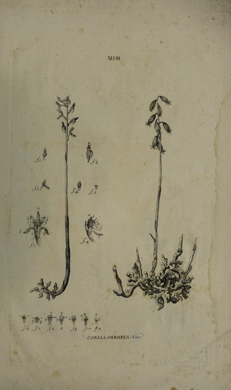 \ a % MMII. f’ 0^0 'Sm-rn I^m m‘*b V J-^- J-7. Js- S. J'^- C OllALL ORRHlZAoyV/.w^