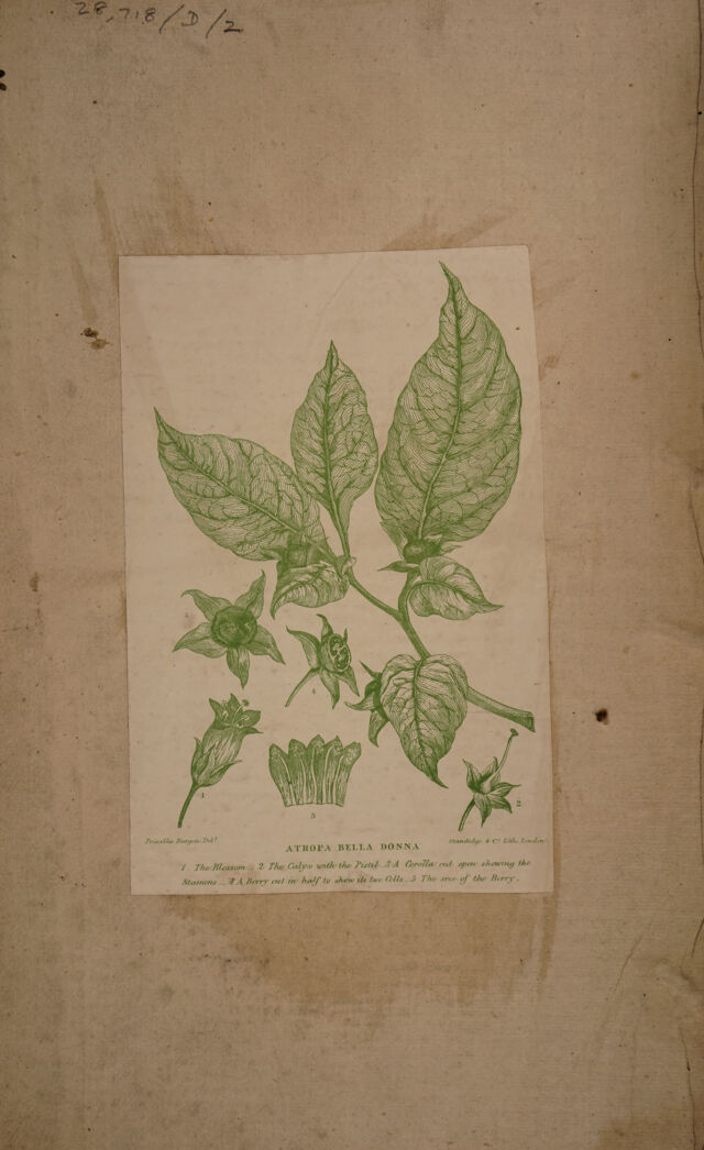 digitised image 2