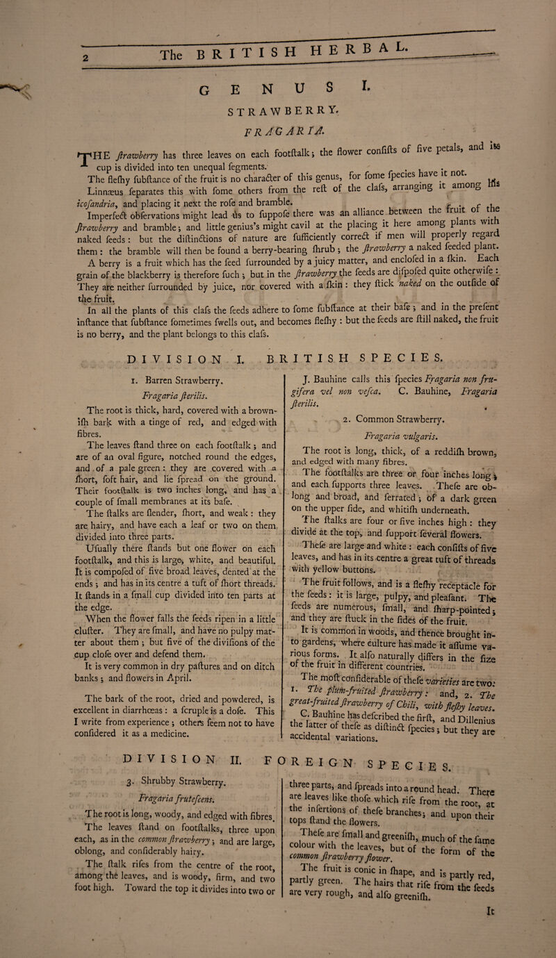 The BRITISH HERBAL GENUS I. STRAWBERRY. FRAGARIA. fpHE Jirawberry has three leaves on each footftalks the flower confifts of five petals, *** cup is divided into ten unequal fegments. ' , . . The flefhy fubftance of the fruit is no charader of this genus, for fome pecies ave 1 ^ Linnseus feparates this with fome others from the reft of the clafs, ariangin0 it amonD icofandria, and placing it next the rofe and bramble. _ u f v f thp Imperfed obfervations might lead us to fuppofe there was an alliance between t c rui o Jirawberry and bramble; and little genius’s might cavil at the placing it here among p ants wit naked feeds: but the diftindions of nature are fufficiently corred if men will properly regard them : the bramble will then be found a berry-bearing fhrub *, the Jirawberry a naked feeded plant. A berry is a fruit which has the feed furrounded by a juicy matter, and enclofed in a fkin. Each grain of the blackberry is therefore fuch ; but in the Jirawberry the feeds are difpoied quite otherwi e . They are neither furrounded by juice, nor covered with a fkin : they flick naked on the outfide o the fruit. In all the plants of this clafs the feeds adhere to fome fubftance at their bafe and in the prefenc inftance that fubftance fometimes fwells out, and becomes flefhy : but the feeds are ftill naked, the fruit is no berry, and the plant belongs to this clafs. DIVISION I. BRITISH SPECIES. i. Barren Strawberry. Fragaria Jlerilis. The root is thick, hard, covered with a brown- ifh bark with a tinge of red, and edged with fibres. The leaves ftand three on each footftalk ; and are of an oval figure, notched round the edges, and of a pale green : they are covered with a fhort, foft hair, and lie fpread on the ground. Their footftalk is two inches long, and has a couple of fmall membranes at its bafe. The ftalks are (lender, fhort, and weak : they are hairy, and have each a leaf or two on them divided into three parts. Ufually there ftands but one flower on each footftalk, and this is largo, white, and beautiful. It is compofed of five broad leaves, dented at the ends •, and has in its centre a tuft of fhort threads. It ftands in a fmall cup divided into ten parts at the edge. When the flower falls the feeds ripen in a little clufter. They are fmall, and have no pulpy mat¬ ter about them ; but five of the divisions of the Cup clofe over and defend them. It is very common in dry paftures and on ditch banks \ and flowers in April. The bark of the root, dried and powdered, is excellent in diarrhoeas : a fcrupleis a dofe. This I write from experience ; others feem not to have confidered it as a medicine. | J. Bauhine calls this fpecies Fragaria non frit- gif era vel non vefca. C. Bauhine, Fragaria Jlerilis. 2. Common Strawberry. Fragaria vulgaris. The root is long, thick, of a reddifh brown, and edged with many fibres. The footftalks are three or four inches long * and each fupports three leaves. Thefe are ob¬ long and broad, and ferrated ; of' a dark green on the upper fide, and whitifh underneath. f he ftalks are four or five inches high : they divide at the top, and fuppoft feveral flowers. — o--jiiiLo ux a leaves, and has in its centre a great tuft of threa with yellow buttons. The fruit follows, and is a flefhy receptacle f the feeds: it is large, pulpy, and pleafant. T feeds are numerous, fmall, and fharp~pointe< and they are ftuck in the Tides of the fruit. It is common in woods, and thence brought i to gardens, where culture has made it afiiime v rious forms. It alfo naturally differs in the ft of the fruit in different countries. The moft confiderable of thefe varieties are tw i. The plum-fruited Jirawberry: and, 2. T great-fruited Jirawberry of Chili, with JleJhy leavt C. Bauhine has deferibed the firft, and Dilleni the latter of thefe as diftineft fpecies; but they a accidental variations. DIVISION II. FOREIGN SPECIES. 3. Shrubby Strawberry. Fragaria frutefeens. The root is long, woody, and edged with fibres. The leaves ftand on footftalks, three upon each, as in the common Jirawberry; and are large, oblong, and confiderably hairy. The ftalk rifes from the centre of the root among the leaves, and is woody, firm, and two foot high. Toward the top it divides into two or r - ir-iicau. 1 are leaves like thofe which rife from the roo the infertions of thefe branches; and upon tops ftand the flowers. Thefe are fmall and greenilh, much of the colour with the leaves, but of the form of common Jirawberry flower. The fruit is conic in fhape, and is partly partly green. The hairs that rife from the 1 are very rough, and alfo greenifh.