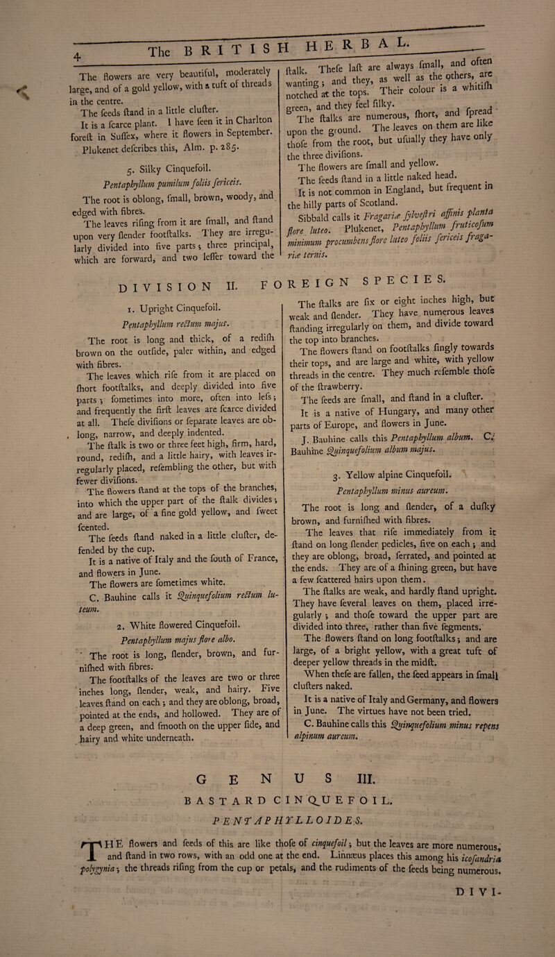 The flowers are very beautiful, moderately large, and of a gold yellow, with a tuft of threads in the centre. The feeds (land in a little duller. It is a fcarce plant. 1 have feen it in Charlton fore ft in SulTex, where it flowers in September. Plukenet defcribes this, Aim. p.285. 5. Silky Cinquefoil. Pentaphyllum pumilum foliis fericeis. The root is oblong, fmall, brown, woody, and edged with fibres. The leaves rifing from it are fmall, and {land upon very (lender footftalks. *1 hey are irregu¬ larly divided into five parts $ three principal, which are forward, and two lefier toward the (talk Thefe laft are always fmall, and often wanting, and they, as well as the others, are notched it the top. Their colour is a whitilh green, and they feel filky. , b The ftalks are numerous, fhort, and fp upon the ground. The leaves on them are l.lre thofe from the root, but ufually they have on y the three divifions. The flowers are fmall and yellow. The feeds (land in a little naked head. It is not common in England, but frequent in the hilly parts of Scotland. Sibbald calls it FragarU fyheftri affinis planta (lore luteo. Plukenet, Pentaphyllum fruttcofum minimum procumbens flore luteo folks fericeis fraga- vi.o tPvmS. DIVISION II. F 1. Upright Cinquefoil. Pentaphyllum rectum majus. The root is long and thick, of a redifli brown on the outfide, paler within, and edged with fibres. The leaves which rife from it are placed on fhort footftalks, and deeply divided into five parts *, fometimes into more, often into lefs; and frequently the firft leaves are fcarce divided at all. Thefe divifions or feparate leaves are ob¬ long, narrow, and deeply indented. The ftalk is two or three feet high, firm, hard, round, redifh, and a little hairy, with leaves ir¬ regularly placed, refembling the other, but with fewer divifions. The flowers ftand at the tops of the branches, into which the upper part of the ftalk divides ; and are large, of a fine gold yellow, and fweet feented. The feeds (land naked in a little duller, de¬ fended by the cup. ^ It is a native of Italy and the fouth of France, and flowers in June. The flowers are fometimes white. C. Bauhine calls it Quinquefolium return lu- teum. 2. White flowered Cinquefoil. Pentaphyllum majus flore albo. ' The root is long, (lender, brown, and fur- nifhed with fibres: The footftalks of the leaves are two or three inches long, (lender, weak, and hairy. Five leaves (land on each •, and they are oblong, broad, pointed at the ends, and hollowed. They are of a deep green, and fmooth on the upper fide, and hairy and white underneath. O REIGN SPECIES. The ftalks are fix or eight inches high, but weak and (lender. They have numerous leaves (landing irregularly on them, and divide towaid the top into branches. Ttie flowers ftand on footftalks fingly towards their tops, and are large and white, with yellow threads in the centre. They much refemble thofe of the ftrawberry. The feeds are fmall, and (land in a duller. It is a native of Hungary, and many other parts of Europe, and flowers in June. J. Bauhine calls this Pentaphyllum album. Cl Bauhine jpuinquefolium album majus. 3. Yellow alpine Cinquefoil. Pentaphyllum minus aureum. The root is long and (lender, of a dufky brown, and furnifhed with fibres. The leaves that rife immediately from it ftand on long {lender pedicles, five on each ; and ■ they are oblong, broad, ferrated, and pointed at the ends. They are of a (hining green, but have a few fcattered hairs upon them. The ftalks are weak, and hardly (land upright. They have feveral leaves on them, placed irre¬ gularly ♦, and thofe toward the upper part are divided into three, rather than five fegments. i The flowers ftand on long footftalks; and are large, of a bright yellow, with a great tuft of deeper yellow threads in the midft. When thefe are fallen, the feed appears in fmall clufters naked. It is a native of Italy and Germany, and flowers in June. The virtues have not been tried. C. Bauhine calls this Quinquefolium minus repens alpinum aureum. <. genus hi. BASTARD CIN Q_U E F O I L. PEN? J P HTLLO ID E S. THE flowers and feeds of this are like thofe of cinquefoil; but the leaves are more numerous: and ftand in two rows, with an odd one at the end. Linnaeus places this among his icofandria polygynia-, the threads rifing from the cup or petals, and the rudiments of the feeds being numerous. D I V I-