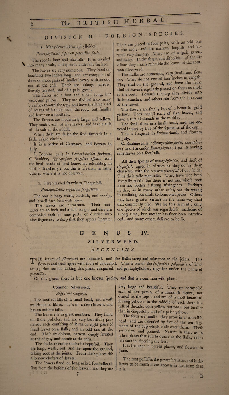 DIVISION II. i. Many-leaved Pentaphylloides. Pentaphylloides fupinum potentilla facie. The root is long and blackifh. It is divided V into many heads, and fpreads under the furface. The leaves are very numerous. They (land on footitalks two inches long, and are compofed of three or more pairs of fmaller leaves, with an odd one at the end. Thefe are oblong, narrow, fharply ferrated, and of a pale green. The (talks are a foot and a half long, but weak and yellow. They are divided into many branches toward the top, and have the fame kind of leaves with thofe from the root, but fmaller and fewer on a footftalk. The flowers are moderately large, and yellow. They conflft: each of five leaves, and have a tuft of threads in the middle. When thefe are fallen the feed fucceeds in a little naked clutter. It is a native of Germany, and flowers in Ju>y- J. Bauhine calls it Pentaphylloides fupinum. C. Bauhine, Efuinquefolio fragifero affinis, from the ttnall heads or feed fomewhat refembling an unripe ftrawberry ; but this is lefs than in many others, where it is not obferved. 2. Silver-leaved ftrawbery Cinquefoil. Pentaphylloides argentum fragiferum. The root is long, thick, blackifh, and woody, and is well furnifhed with fibres. The leaves are numerous. Their foot- ftalks are an inch and a half long; and they are compofed each of nine parts, or divided into nine fegments, fo deep that they appear feparate. foreign species. Thefe are placed in four pairs, with an odd one at the end; and are narrow, longifh, and let rated very fharply. They are of a pa e gieen, and hairy. In the fliape and difpofition of the di-, vifions they much referable the leaves ot the com-; mon filverweed. The {talks are numerous, very fmall, and ilcn- der. They do not exceed four inches in length. They trail on the ground, and have the lame kind of leaves irregularly placed on them as toe at the root. Toward the top they divide into little branches, and others rife from the bottoms of the leaves. The flowers are fmall, but of a beautiful gold yellow. They conflft each of five leaves, and have a tuft of threads in the middle. The feeds ripen in a fmall head, and are co¬ vered in part by five of the fegments of the cup. This is frequent in Switzerland, and flowers in July. C. Bauhine calls it Quinquefolio fimilis enneaphyl- los ; and Parkinfon Enneaphyllon ; from its having nine leaves on a footftalk. All thefe fpecies of pentaphylloides, and thofe of cinquefoil, agree in virtues as they do in their characters with the common cinquefoil of our fields. This their tafte manifefts. They have not been feverally tried ; but there is not one whofe root does not poflefs a ftrong aftringency. Perhaps in this, as in many other cafes, we do wrong in confining our trials to fome one fpecies. Others may have greater virtues in the fame way than that commonly ufed. We fee this in mint; only one fpecies of which was regarded in medicine of a long time, but another has- fince been introdu¬ ced ; and many others deferve to be fo. GENUS IV. SILVER WEED. ARGENTINA. npHE leaves of filverweed are pinnated, and the {talks creep and take root at the joints. 'The flowers and feeds agree with thofe of cinquefoil. This is one of the icofandria polyandria of Lin- naeu.s; that author ranking this plant, cinquefoil, and pentaphylloides, together under the name of potentilla. Of this genus there is but one known fpecies, and that is a common wild plant. Common Silverweed. Argentina vulgaris. The root confifts of a fmall head, and a vaft multitude of fibres. It is of a deep brown, and has an auftere tafte. The leaves rife in great numbers. They ftand on fhort pedicles, and are very beautifully pin¬ nated, each confifting of ftven or eight pairs of fmall leaves on a ftalk, and an odd one at the end. Thefe are oblong, narrow, deeply ferrated at the edges, and obtufe at the ends. The {talks refemble thofe of cinquefoil. They are long, weak, red, and lie upon the ground, taking root at the joints. From thefe places rife alfo new clutters of leaves. The flowers ftand on long naked footftalks ri¬ fting from the bofoms of the leaves; and they are • a 7 very large and beautiful. They are compofed each of five petals, of a roundifh figure, not dented at the tops: and are of a moft beautiful fhining yellow : in the middle of each there is a tuft of threads, with yellow buttons; but fmaller than in cinquefoil, and of a paler yellow. The feeds are fmall: they grow in a roundifh head, and are defended by five of the ten fer¬ ments of the cup which clofe over them. Thde are hairy, and pointed. Nature in this, as in other plants that run fo quick at the ftalk, takes lefs care in ripening the feed. It is frequent in barren places, and flowers in June. The root poflefles the greateft virtue, and it de- ferves to be much more known in medicine than it is. » ^