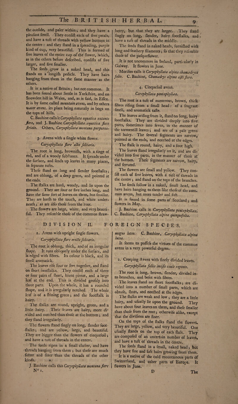 The B R I T I S the outfide, and paler within ; and they have a plea fan t fmell. 'I hey confift each of five petals, and have a tuft of threads with yellow buttons in the centre : and they Hand in a fpreading, purple kind of cup, very beautiful. This is formed of five leaves of the entire cup of the flower, which, as in the others before defcribed, confifts of five larger, and five fmaller. The feeds grow in a naked head, and this Hands on a longifh pedicle. They have hairs hanging from them in the fame manner as the others. It is a native of Britain ; but not common. It has been found about Settle in Yorkfhire, and on Snowden hill in Wales, and* as is faid, in Effex. It is by lome called mountain avens^ and by others water avens, its place being naturally in bogs on the tops of hills. C. Bauhine calls it Caryophyllata aquatica ?iutante fiore* and J. Bauhine Caryophyllata aquatica fiore firiato. Others, Caryophyllata montana purpurea. 3. Avens with a fingle white flower. Caryophyllata fiore albo folitario. The root is long, brownifh, with a tinge of red, and of a woody fubflance. It fpreads under the furface, and fends up leaves in many places, in feparate tufts. Thefe Hand on long and flender footftalks; and are oblong, of a deep green, and pointed at the ends. The {talks are hard, woody, and lie upon the ground. They are four or five inches long, and have the fame fort of leaves on them, but fmaller. They are harfh to the touch, and white under¬ neath ; as are alfo thofe from the root. The flowers are large, white, and very beauti¬ ful. They refemble thofe of the common ftraw- DIVISION II. F O 1. Avens with upright fingle flowers. Caryophyllata fiore eretto folitario. The root is oblong, thick, and of an irregular fliape. It runs obliquely under the furface, and is edged with fibres. Its colour is black, and its fmell aromatick. The leaves rife four or five together, and ftand on fhort footftalks. They confilt each of three or four pairs of fhort, blunt pinnae, and a large leaf at the end. This is divided grofsly into three parts. Upon the whole, it has a rounded fhape, and it is irregularly notched. The whole leaf is of a fhining green ; and the footftalk is hairy. The ftalks are round, upright, green, and a little hairy. Their leaves are hairy, more di' vided and notched than thofe at the bottom ; and they ftand irregularly. The flowers ftand fingly on long, flender foot- ftalks; and are yellow, large, and beautiful. They are bigger than the flowers of cinquefoil; and have a tuft of threads in the centre. The feeds ripen in a fmall duller, and have threads hanging from them \ but thefe are much fotter and finer than the threads of the other kinds. . t J. Bauhine calls this Caryophyllata montana fiore | NQi. H HERBAL. berry, but that they are larger. They ftand fingly on long, flender, hairy footftalks* and have a tuft of threads in the middle; The feeds ftand in naked heads, furnifhed with long and feathery filaments; fo that they referable thofe of the pafquefloWer. It is not uncommon in Ireland, particularly in Galway. It flowers in June. Morifon calls it Caryophyllata alpina chamadryoi folio. C. Bauhine, Chamxdrys alpina cifii fiore. 4. Cinquefoil avens. Carophyllata pentaphyllaa. The root is a tuft of numerous, brown, thick fibres rifing from a fmall head: of a fragrant fmell, and aromatick tafte. The leaves arifingfrom it, ftand On long, hairy footftalks. They are divided deeply into five parts, fometimes into feven, in the manner of the tormentill leaves ; and are of a pale green and hairy. The feveral fegments are narrow* pointed at the ends, and notched at the edges. The ftalk is round, hairy, and a foot high. The leaves ftand irregularly on it, and are di¬ vided into five parts, in the manner of thofe at the bottom. Thefe fegments are narrow, hairy, and ferrated. The flowers are fmall and yellow. They ton- fift each of five leaves* with a tuft Of threads in the centre ; and ftand on the tops of the branches. The feeds follow in a naked, fmall head, and have hairs hanging to them like thofe of the com, mon avens, but more tender and foft. It is found in fome parts of Scotland ; and flowers in May. J- Bauhine calls it Caryophyllata pentaphylUa4 C. Bauhine, Caryophyllata alpina quinquefolia. 9 * * t ' r-. 1 *■* t r- REIGN SPECIES. . i 4. , t \ magno luteo. C. Bauhine, Caryophyllata alpina lutea. It feems to poffefs the virtues of the commori avens in a very powerful degree.- 2. Creeping AvenS with finely divided leaves. Caryophyllata foliis incifis caule repente. The root is long, brown, flender, divided in¬ to branches, and befet with fibres. The leaves ftand on fhort footftalks; are di¬ vided into a number of fmall parts, which are obtufe, fhort, and notched at the edges. The ftalks are weak and low * they are a little hairy, and ufually lie upon the ground. They have about four leaves on them, and thefe fmaller than thofe from the root; otherwife alike, except that the divifidns ate finer. On the tops of the ftalks ftand the flower^. They are large, yellow, and very beautiful. One ufually ftands on the top of each ftalk. They are compofed of an uncertain number of leaved, and have a tuft of threads in the centre. f he feeds ftand in a fmall, naked head; but they have fine and foft hairs growing from them. It is a native of the Cold mountainous parts of Switzerland, and other parts of Europe. It flowers in June.