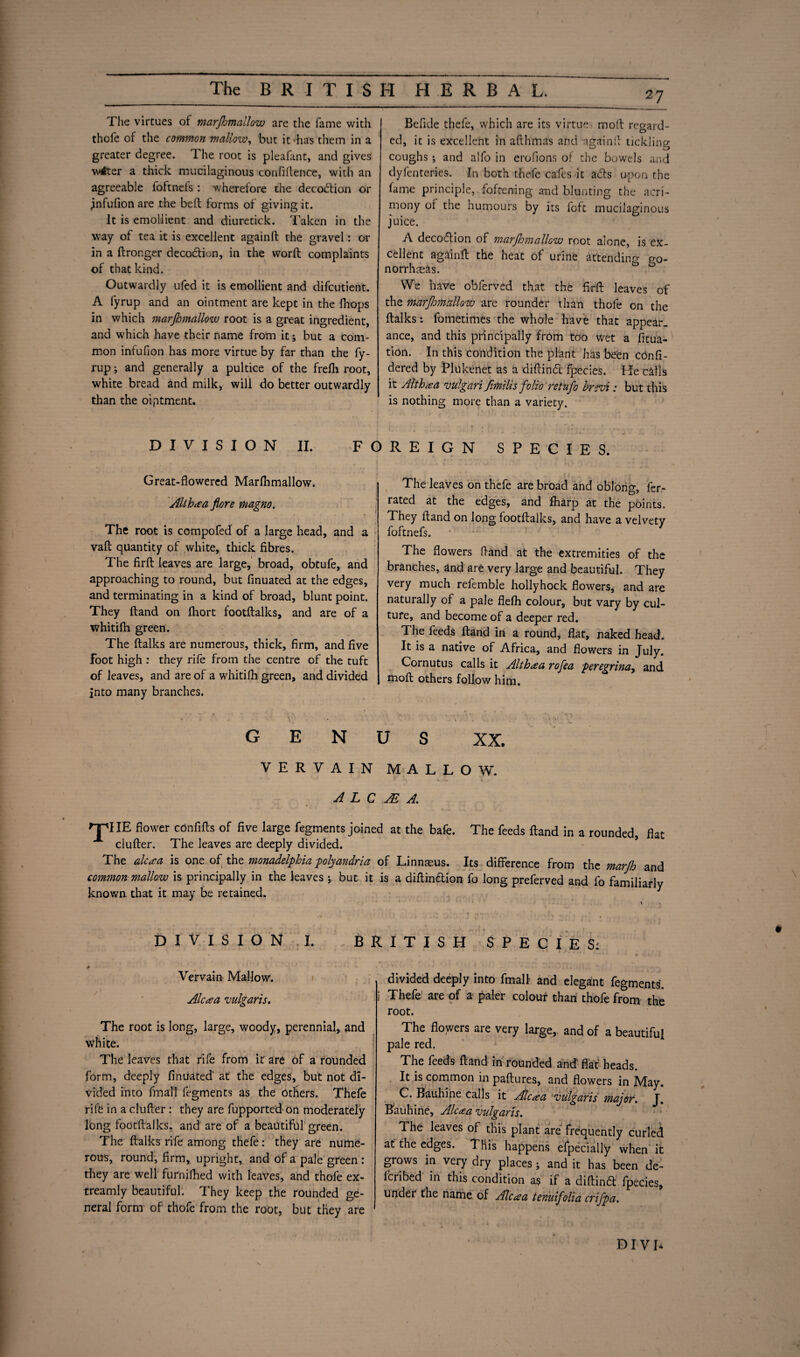 27 The virtues of marjhmallow are the fame with thofe of the common mallow, but it'has them in a greater degree. The root is pleafant, and gives wtfter a thick mucilaginous confidence, with an agreeable foftnels : wherefore the decodlion or jnfufion are the bed forms of giving it. It is emollient and diuretick. Taken in the way of tea it is excellent againd the gravel: or in a dronger deco&ion, in the word complaints of that kind. Outwardly ufed it is emollient and difcutient. A fyrup and an ointment are kept in the fhops in which marjhmallow root is a great ingredient, and which have their name from it; but a com¬ mon infufion has more virtue by far than the fy¬ rup ; and generally a pultice of the frefli root, white bread and milk) will do better outwardly than the oiptment. Befide thefe, which are its virtue- mod regard¬ ed, it is excellent in afthmas and againd tickling coughs; and alfo in erofions of the bowels and dyfenteries. In both thefe cafes it acSts upon the fame principle, fofcening and blunting the acri¬ mony of the humours by its foft mucilaginous juice. A decodlion of marjhmallow root alone, is ex¬ cellent againd the heat of urine attending a0- norrhteas. We have oblerved that the fi-rd leaves of the marjhmtdlow are rounder than thofe on the dalks; fometimes the whole have that appear, ance, and this principally from too wet a fitua- tion. In this condition the plant has been cbnfi- dered by Plukenet as a didindt fpecies. He calls it Althaa vulgari fimllis folio retufo hrevi: but this is nothing more than a variety. DIVISION II. FOREIGN SPECIES. Great-flowered Marflimallow. Althaa jlore magno. The root is compofed of a large head, and a vad quantity of white, thick fibres. The fird leaves are large, broad, obtufe, and approaching to round, but finuated at the edges, and terminating in a kind of broad, blunt point. They dand on fhort footdalks, and are of a whitifh green. The dalks are numerous, thick, firm, and five foot high : they rife from the centre of the tuft of leaves, and are of a whitifh green, and divided into many branches. The leaves on thefe are broad and oblong, fer- rated at the edges, and fharp at the points. They dand on long footdalks, and have a velvety foftnefs. The flowers fiand at the extremities of the branches, and are very large and beautiful. They very much refemble hollyhock flowers, and are naturally of a pale flefh colour, but vary by cul¬ ture, and become of a deeper red. The feeds dand in a round, flat, naked head. It is a native of Africa, and flowers in July. Cornutus calls it Althaa rofea peregrina, and mod others follow him. GENU XX. VERVAIN MALLOW. A L C AS A. npIIE flower confids of five large fegments joined at the bafe. The feeds dand in a rounded, dat cluder. The leaves are deeply divided. The alcaa is one of the monadelphia polyandria of Linnaeus. Its difference from the marjh and common mallow is principally in the leaves ; but it is a didindtion fo long preferved and fo familiarly known that it may be retained. DIVISION I. BRITISH SPECIES. Vervain Mallow. Alcaa vulgaris. The root is long, large, woody, perennial, and white. The leaves that rife from it are of a rounded form, deeply finuated' at the edges, but not di¬ vided into fmall fegments as the Others. Thefe rife in a cluder : they are fupported on moderately long footdalks. and are of a beautiful green. The dalks rife among thefe: they are nume¬ rous, round, firm, upright, and of a pale green: they are well furnifhed with leaves, and thofe ex- treamly beautiful. They keep the rounded ge¬ neral form of thofe from the root, but they are divided deeply into final! and elegant fegments. Thefe are of a paler colour than thofe from the root. The dowers are very large,, and of a beautiful pale red. The feeds dand in rounded and' flat heads. It is common in padures, and flowers in May. C. Bauhine calls it AJlcaa vulgaris major. J. Bauhine, Ale a a vulgaris. The leaves of this plant are frequently curled at the edges. This happens efpecially when it grows in very dry places; and it has been de- fcribed in this condition a$ if a diftindt fpecies, under the name of Ale a a tenuifolia crifpa. DIVL