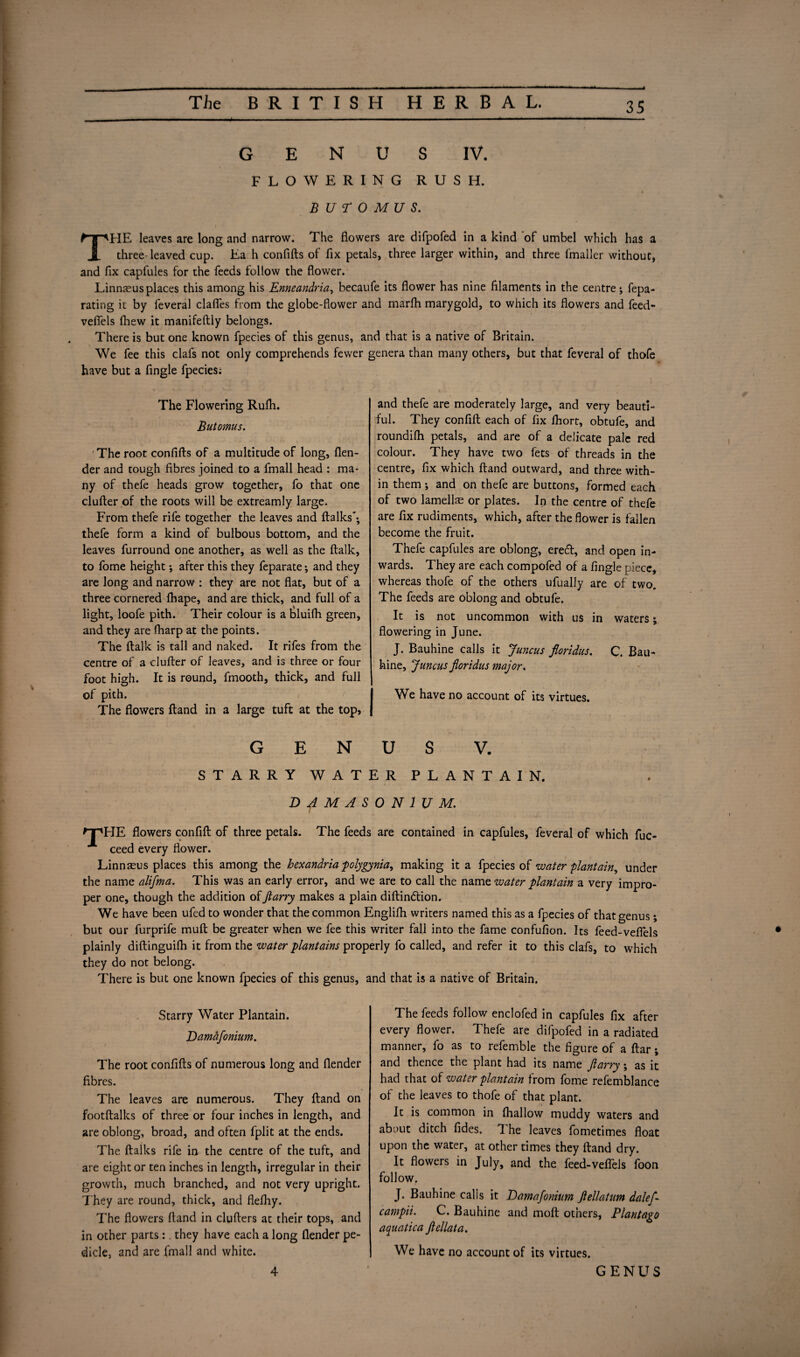 FLOWERING RUSH. . • B U E O M u s. TFIE leaves are long and narrow. The flowers are difpofed in a kind of umbel which has a three-leaved cup. Ea h confifts of fix petals, three larger within, and three fmaller without, and fix capfules for the feeds follow the flower. Linnaeus places this among his Enneandria, becaufe its flower has nine filaments in the centre*, fepa- rating it by feveral clafles from the globe-flower and marfh marygold, to which its flowers and feed- veflels ihew it manifeftly belongs. There is but one known fpecies of this genus, and that is a native of Britain. We fee this clafs not only comprehends fewer genera than many others, but that feveral of thofe have but a Angle fpecies; The Flowering Rufli. Butomus. ' The root confifts of a multitude of long, {len¬ der and tough fibres joined to a fmall head : ma¬ ny of thefe heads grow together, fo that one clufter of the roots will be extreamly large. From thefe rife together the leaves and (talks'-, thefe form a kind of bulbous bottom, and the leaves furround one another, as well as the ftalk, to fome height; after this they feparate; and they are long and narrow : they are not flat, but of a three cornered lhape, and are thick, and full of a light, loofe pith. Their colour is a bluifh green, and they are fharp at the points. The ftalk is tall and naked. It rifes from the centre of a clufter of leaves, and is three or four foot high. It is round, fmooth, thick, and full of pith. The flowers ftand in a large tuft at the top, GENUS V. STARRY WATER PLANTAIN. EflMASONlUM. HE flowers confift of three petals. The feeds are contained in capfules, feveral of which fuc- ceed every flower. Linnaeus places this among the bexandria polygyria, making it a fpecies of water plantain, under the name alifma. This was an early error, and we are to call the name water plantain a very impro¬ per one, though the addition offiarry makes a plain diftindtion. We have been ufed to wonder that the common Englifh writers named this as a fpecies of that genus; but our furprife mud be greater when we fee this writer fall into the fame confufion. Its feed-veflels plainly diftinguifh it from the water plantains properly fo called, and refer it to this clafs, to which they do not belong. There is but one known fpecies of this genus, and that is a native of Britain. and thefe are moderately large, and very beauti¬ ful. They confift each of fix fhort, obtufe, and roundifh petals, and are of a delicate pale red colour. They have two fets of threads in the centre, fix which ftand outward, and three with¬ in them *, and on thefe are buttons, formed each of two lamellae or plates. In the centre of thefe are fix rudiments, which, after the flower is fallen become the fruit. Thefe capfules are oblong, eredt, and open in¬ wards. They are each compofed of a Angle piece, whereas thofe of the others ufually are of two. The feeds are oblong and obtufe. It is not uncommon with us in waters; flowering in June. J. Bauhine calls it Juncus fioridus. C. Bau- hine, Juncus fioridus major. We have no account of its virtues. Starry Water Plantain. Eamafonium. The root confifts of numerous long and (lender fibres. The leaves are numerous. They ftand on footftalks of three or four inches in length, and are oblong, broad, and often fplit at the ends. The ftalks rife in the centre of the tuft, and are eight or ten inches in length, irregular in their growth, much branched, and not very upright. They are round, thick, and fleftiy. The flowers ftand in clufters at their tops, and in other parts:. they have each a long (lender pe¬ dicle, and are fmall and white. The feeds follow enclofed in capfules fix after every flower. Thefe are difpofed in a radiated manner, fo as to refemble the figure of a ftar; and thence the plant had its name fiarry; as it had that of water plantain from fome refemblance of the leaves to thofe of that plant. It is common in (hallow muddy waters and about ditch fides. The leaves fometimes float upon the water, at other times they ftand dry. It flowers in July, and the feed-veflels foon follow. J. Bauhine calls it Eamafonium ftellatum dale/* campii. C. Bauhine and mod others, Plant ago aquatic a fiellata. We have no account of its virtues.