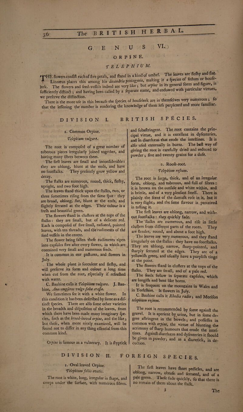 ORPINE. TELEPHIUM. npHE flowers confift each of five petals,’and (land in a kind of umbel. . The leaves are flelhy an Linnaeus places this among his decandria pentagynia, making it a pecies o e unJ°r leek. The flowers and feed-veffels indeed are very like •, but orpine in its genera orm an ° * fufficiently diftindt ; and having been called by a feparate name, and endowe wit particu ar vir , we preferve the diitindtion. ' r There is the more ufe in this becaufe the fpecies of houfeleek are in them e ves very numerous, that the leffening the number is rendering the knowledge of them lefs perplexed and more familiar. D I VISION I. BRITISH SPECIES. i. Common Orpine. !Telephium vulgar e. The root is compofed of a great number of tuberous pieces irregularly joined together, and having many fibres between them. The firft: leaves are fmall and inconfiderable; they are oblong, blunt at the ends, and have no footftalks. They prefently grow yellow and decay. The ftalks are numerous, round, thick, flefhy, upright, and two foot high. The leaves (land thick upon the ftalks, two, or three fometimes rifing from the fame fpot: they are broad, oblong, flat, blunt at the ends, and flightly ferrated at the edges. Their colour is a frefh and beautiful green. The flowers ftand in clutters at the tops of the ftalks: they are fmall, but of a delicate red. Each is compofed of five fmall, radiated, pointed leaves, with ten threads, and the rudiments of the feed veflfels in the centre. The flower being fallen thefe rudiments ripen into capfules five after every flower, in which are contained very fmall and numerous feeds. It is common in our paftures, and flowers in July- The whole plant is fucculent and flelhy, and will preferve its form and colour a long time when cut from the root, efpecially if refrelhed with water. C. Bauhine calls it Telephium vulgare. J. Bau- hine, Anacampferos vulgo faba crajja. We fometimes fee it with a white flower. In this condition it has been defcribed by fome as a dif- tindl fpecies. There are alfo fome other varieties in the breadth and difpofition of the leaves, from which there have been made many imaginary fpe¬ cies, fuch as the broad-leaved orpine, and the like ; but thefe, when more nicely examined, will be found not to differ in any thing effential from this common kind. Orpine is famous as a vulnerary. It is ftyptick and fubaftringent. The root contains the prin¬ cipal virtue, and it is excellent in dyfenteries, and in diarrhaeas that erode the inteftines. It is alfo ufed externally in burns. The beft way of giving the root is carefully dried and reduced to powder ; five and twenty grains for a dofe. 2. Roofe-root. Telephium rofeum. The root is large, thick, and of an irregular form, oblong, and tuberous, and full of fibres : it is brown on the outfide and white within, and is brittle, and of a very pleafant fmell. There is plainly the fcent of the damafk rofe in it, but it is very flight; and the fame flavour is perceived in tailing it. The firft leaves are oblong, narrow, and with¬ out footftalks: they quickly fade. The ftalks are numerous, and rife in little clufters from different parts of the roots. They are flender, round, and about a foot high. The leaves are very numerous, and they ftand irregularly on the ftalks : they have no footftalks. They are oblong, narrow, lharp-pointed, and fharply ferrated at the edges. They are of a yellowilh green, and ufually have a purplifh tinge at the point. The flowers ftand in clufters at the tops of the ftalks. They are fmall, and of a pale red. The feeds follow in feparate capfules, which are longilh and bent like horns. It is frequent on the mountains in Wales and in Yorkfhire. It flowers in July. C. Bauhine calls it Rhodia radix \ and Morifon telephium rofeum. The root is recommended by fome againft the gravel. It is aperient by.urine, but in fome de¬ gree aftnngent in the bowels; and poffeffes in common with orpine, the virtue of blunting the acrimony of fharp humours that erode the intef¬ tines. Againft diarrheas and dyfenteries it Ihould be given in powder; and as a.diuretick, in de¬ coition. DIVISION II. FOREIGN SPECIES. i. Oval leaved Orpine. 'Telephium foliis ovatis. The root is white, long, irregular in lhape, and creeps under the furfaee, with numerous fibres. The firft leaves have ftiort pedicles, and are oblong, narrow, obtufe and ferrated, and of a pale green. Thefe fade quickly, fo chat there is no remain of them about the ftalk.