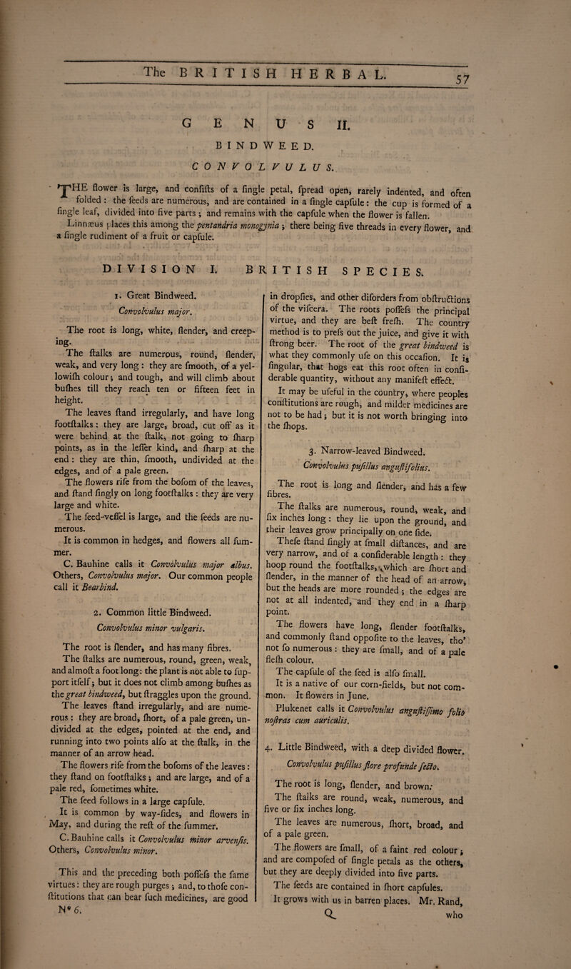 57 G E N U S II. BINDWEED. CONVOLVULUS. 'HE flower is large, and conflfts of a Angle petal, fpread open, rarely indented, and often folded : the feeds are numerous, and are contained in a Angle capfule: the cup is formed of a Angle leaf, divided into Ave parts; and remains with the capfule when the flower is fallen. Linnaeus {.laces this among the pentandria monogynia ; there being Ave threads in every flower, and a Angle rudiment of a fruit or capfule. DIVISION I. BRITISH SPECIES. i. Great Bindweed. Convolvulus major. The root is long, white, flender, and creep¬ ing. . The flalks are numerous, round, flender, weak, and very long : they are fmooth, of a yel- lowifh colour j and tough, and will climb about buflies till they reach ten or flfteen feet in height. The leaves ftand irregularly, and have long footftalks: they are large, broad, cut off as it were behind at the ftalk, not going to fharp points, as in the lefler kind, and fharp at the end : they are thin, fmooth, undivided at the edges, and of a pale green. The flowers rife from the bofom of the leaves, and Hand Angly on long footftalks : they are very large and white. The feed-veflel is large, and the feeds are nu¬ merous. It is common in hedges, and flowers all fum- mer. C. Bauhine calls it Convolvulus major albus. Others, Convolvulus major. Our common people call it Bearbind. 2. Common little Bindweed. Convolvulus minor vulgaris. The root is flender, and has many ftbres. The ftalks are numerous, round, green, weak, and almoft a foot long: the plant is not able to fup- port itfelf; but it does not climb among buflies as the great bindweed, but ftraggles upon the ground. The leaves ftand irregularly, and are nume¬ rous : they are broad, fhort, of a pale green, un¬ divided at the edges, pointed at the end, and running into two points alfo at the ftalk, in the manner of an arrow head. The flowers rife from the bofoms of the leaves: they ftand on footftalks; and are large, and of a pale red, fometimes white. The feed follows in a large capfule. It is common by way-ftdes, and flowers in May, and during the reft of the fummer. C. Bauhine calls it Convolvulus minor arvenfis. Others, Convolvulus minor. This and the preceding both poflefs the fame virtues: they are rough purges; and, to thofe con- ftitutions that can bear fuch medicines, are good N * 6\ in dropfles, and other diforders from obftru&ions of the vifcera. The roots poflefs the principal virtue, and they are beft frefli. The country method is to prefs out the juice, and give it with ftrong beer. The root of the great bindweed is what they commonly ufe on this occaflon. It i$ Angular, that hogs eat this root often in conft- derable quantity, without any manifeft efted. It may be ufeful in the country, where peoples conftitutions are rough, and milder medicines are not to be had ; but it is not worth brinmno- into the fliops. ° 3. Narrow-leaved Bindweed. Convolvulus pujillus angujlifolius. The root is long and flender, and has a few Abres. The ftalks are numerous, round, weak, and Ax inches long : they lie upon the ground, and their leaves grow principally on one fide. Thefe ftand Angly at ftnall diftances, and are very narrow, and of a confiderable length : they hoop round the footftalks, vwhich are'fliort and flender, in the manner of the head of an arrow, but the heads are more rounded; the edges are not at all indented, and they end in a Iharp point. L The flowers have long, flender footftalks, and commonly ftand oppoftte to the leaves, tho* not fo numerous : they are fmall, and of a pale flelh colour. The capfule of the feed is alfo fmall. It is a native of our corn-fields, but not com¬ mon. It flowers in June. Plukenet calls it Convolvulus angujlifjimo folio nojlras cum auriculis. . Little Bindweed, with a deep divided flower. Convolvulus pufillus fore profunde feblo. The root is long, flender, and brown; The ftalks are round, weak, numerous, and Ave or Ax inches long. The leaves are numerous, fhort, broad, and of a pale green. 1 he flowers are fmall, of a faint red colour j and are compofed of Angle petals as the others, but they are deeply divided into Ave parts. The feeds are contained in fhort capfules. It grows with us in barren places. Mr. Rand, Q. who