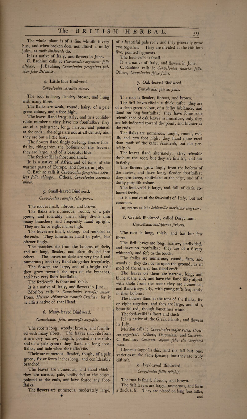 59 The whole plant is of a fine whitifh filvery hue, and when broken does not afford a milky juice, as molt bindweeds do. It is a native of Italy, and flowers in June* C. Bauhine calls it Convolvulus argenteus folio althaa. J. Bauhine, Convolvulus peregrinus pul- cher folio Betonica. 4. Little blue Bindweed. Convolvulus caruleus minor. The root is long, (lender, brown, and hung with many fibres. The ftalks are weak, round, hairy, of a pale green colour, and a foot high. The leaves Hand irregularly, and in a confide- rable number : they have no footftalks: they are of a pale green, long, narrow, and pointed at the ends : the edges are not at all dented, and they are but a little hairy. The flowers Hand fingly on long, (lender foot¬ ftalks, rifing from the bofoms of the leaves : they are large, and of a beautiful blue. The feed-veflel is (hort and thick. It is a native of Africa and of fome of the warmer parts of Europe, and flowers in July. C. Bauhine calls it Convolvulus peregrinus c*eru- leus folio oblongo. Others, Convolvulus caruleus minor. 5. Small-leaved Bindweed. Convolvulus ramofus folio parvo. The root is fmall, fibrous, and brown. The (talks are numerous, round, of a pale green, and tolerably firm: they divide into many branches j and frequently (land upright. They are fix or eight inches high. The leaves are fmall, oblong, and rounded at the ends. They fometimes (land in pairs, but oftener fingly. The branches rife from the bofoms of thefe, and are long, (lender, and often divided into others. The leaves on thefe are very fmall and numerous; and they (land altogether irregularly. The flowers are large, and of a bright red : they grow towards the tops of the branches, and have very (hort footftalks. The feed-veflel is (hort and thick. It is a native of Italy, and flowers in June. Morifon calls it Convolvidus ramofus 7ninor. Pona, Helxine ciffampelos ramofa Cretica; for it is alfo a native of that Eland. 6. Many-leaved Bindweed. Convolvulus foliis numerofis angufis. The root is long, woody, brown, and furnifh- ed with many fibres. The leaves that rife from it are very narrow, longilh, pointed at the ends* and of a pale green: they (land on long foot¬ ftalks, and fade when the ftalks rife. Thefe are numerous, (lender, tough, of a pale green, fix or feven inches long, and confiderably branched. The leaves are numerous, and (land thick : they are narrow, pale, undivided at the edges, pointed at the ends, and have fcarce any foot¬ ftalks. The flowers are numerous, moderately large, 6 of a beautiful pale red ; and they generally grow two together. They are divided at the rim into five, pointed fegments. The feed-veflel is fmall. It is a native of Italy, and flowers in June. C. Bauhine calls it Convolvulus Unaria: foli'Oi, Others, Convolvulus fpica foliis. 7. Oak-leaved Bindweed. Convolvulus apterous folio. The root is (lender, fibrous, and brown. The firft leaves rife in a thick tuft: they are of a deep green colour, of a flelhy fubftance, and (land on long footftalks : they have fome rude refemblance of oak leaves in miniature, only they are lefs indented toward the point, and blunter at the ends. The ftalks are numerous, tough, round, red- ifti, and two foot high: they (land more erecft than moft of the other bindweeds, but not per¬ fectly fo. The leaves (land alternately: they refemble thofe at the root, but they are fmaller, and not fo flefby. The flowers grow fingly from the bofoms of the leaves, and have long, (lender footftalks: they are large, undivided at the edge, ahd of a dulky purplifli colour. The feed-veflel is large, and full of dark co¬ loured feeds. It is a native of the fea-coafts of Italy, but not common. Imperatus calls it Soldanella maritime congener. 8. Cretick Bindweed, called Dorycnium. Convolvulus mulliflorus fericeus. The root is long, thick, and has but feW fibres. The firft leaves are long* narrow, undivided, and have no footftalks : they are of a filvery whitenefs, and foft to the touch. The ftalks are numerous, round, firm, and woody : they do not lie upon the ground, as in moft of the others, but (land eredt. The leaves on them are narrow, Ibng, and blunt at the end, and have the fame filky afpedt with thofe from the root: they are numerous, and (land irregularly, with young tufts frequently in their bofoms. The flowers (land at the tops of the ftalks, fix or eight together, and they are large, and of a beautiful red, though fometimes white. The feed-veflel is fhort and thick. It k a native of the Greek iflands, and flowers in July. Morifon calls it Convolvulus major reblus Creti- cus argenteus. Others, Dorycnium, and Cneorufn. G. Bauhine, Cneorum album folio ola argenteo molli. Linnaeus fuppofes this, and the laft but one, / varieties of the fame fpecies j but they are truly diftincft. * / 9. Ivy-leaved Bindweed. Convolvulus foliis trilobis. 1 he root is fmall, fibrous, and brown. 1 he firft leaves are large, numerous, and form a thick tuft. They are placed on long footftalks, and