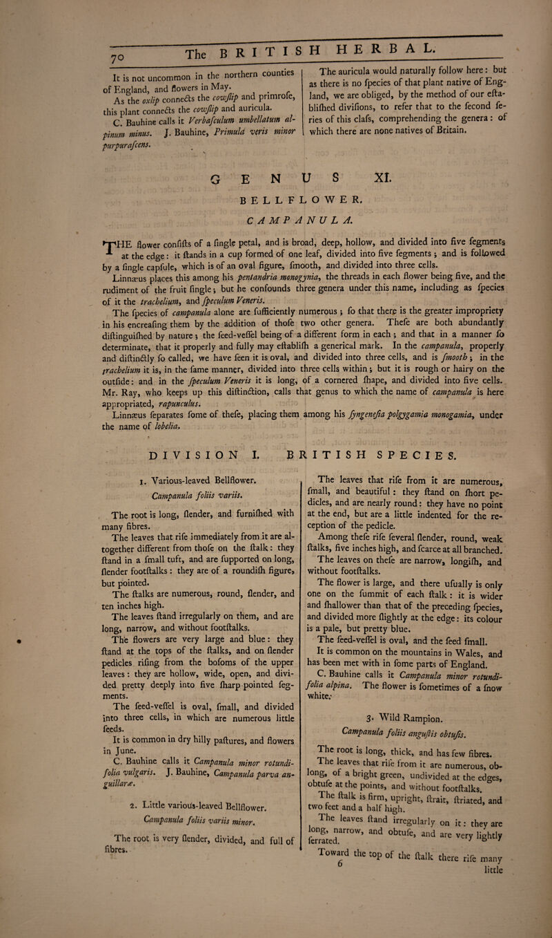 It is not uncommon in the noithern counties of England, and flowers in May. # As the oxlip connects the cowjlip and primrofe, this plant conne&s the cowjlip and auricula. C. Bauhine calls it Verbafculum umbellatum al- pinum minus. J. Bauhine, Primula veris minor purpurafcens. The auricula would naturally follow here : but as there is no fpecies of that plant native of Eng¬ land, we are obliged, by the method of our efta- blifhed divifions, to refer that to the fecond fe- ries of this clafs, comprehending the genera : of , which there are none natives of Britain. GENUS XI. BELLFLOWER. CAMPANULA. THE flower confifts of a fingle petal, and is broad, deep, hollow, and divided into five fegments at the edge: it (lands in a cup formed of one leaf, divided into five fegments j and is followed by a fingle capfule, which is of an oval figure, fmooth, and divided into three cells. Linnseus places this among his pentandria monogynia, the threads in each flower being five, and the rudiment of the fruit fingle •, but he confounds three genera under this name, including as fpecies of it the trachelium, and fpeculum Veneris. The fpecies of campanula alone are fufficiently numerous ; fo that there is the greater impropriety in his encreafing them by the addition of thofe two other genera. Thefe are both abundantly diftinguifhed by nature 5 the feed-veflel being of a different form in each ; and that in a manner fo determinate, that it properly and fully may ettablifh a generical mark. In the campanula, properly and diftindlly fo called, we have feen it is oval, and divided into three cells, and is fmooth ; in the trachelium it is, in the fame manner, divided into three cells within; but it is rough or hairy on the outfide: and in the fpeculum Veneris it is long, of a cornered fhape, and divided into five cells. Mr. Ray, who keeps up this diftindtion, calls that genus to which the name of campanula is here appropriated, rapunculus. Linnaeus feparates fome of thefe, placing them among his fyngenefia polgygamia monogamiay under the name of lobelia. DIVISION I. B I. Various-leaved Bellflower. Campanula foliis variis. The root is long, (lender, and furnilhed with many fibres. The leaves that rife immediately from.it are al¬ together different from thofe on the ftalk: they Hand in a fmall tuft, and are fupported on long, {lender footftalks: they are of a roundifli figure, but pointed. The ftalks are numerous, round, flender, and ten inches high. The leaves ftand irregularly on them, and are long, narrow, and without footftalks. The flowers are very large and blue: they ftand at the tops of the ftalks, and on flender pedicles rifing from the bofoms of the upper leaves: they are hollow, wide, open, and divi¬ ded pretty deeply into five (harp pointed feg¬ ments. The feed-veflel is oval, fmall, and divided into three cells, in which are numerous little feeds. It is common in dry hilly paftures, and flowers in June. C. Bauhine calls it Campanula minor rotundi- folia vulgaris. J. Bauhine, Campanula parva an• guillara. 2. Little various-leaved Bellflower. Campanula Joins varus minor. The root is very flender, divided, and full of fibres. RITISH SPECIES. The leaves that rife From it are numerous, fmall, and beautiful : they ftand on lhort pe¬ dicles, and are nearly round: they have no point at the end, but are a little indented for the re¬ ception of the pedicle. Among thefe rife feveral flender, round, weak ftalks, five inches high, and fcarce at all branched. The leaves on thefe are narrow, longilh, and without footftalks. The flower is large, and there ufually is only one on the fummit of each ftalk: it is wider and fhallower than that of the preceding fpecies, and divided more (lightly at the edge: its colour is a pale, but pretty blue. The feed-veflel is oval, and the feed fmall. It is common on the mountains in Wales, and has been met with in fome parts of England. C. Bauhine calls it Campanula minor rotundi- folia alpina. The flower is fometimes of a fnow white; 3. Wild Rampion. Campanula foliis anguflis obtufis. The root is long, thick, and has few fibres. The leaves that rife from it are numerous, ob- °/1&* ° a green, undivided at the edges, obtufe at the points, and without footftalks The ftalk is firm, upright, ftrait, ftriated, and two feet and a half high. The leaves ftand irregularly on it: they are ferrate^™™’ ^ and are vcry ligEtly Toward the top of the ftalk there rife many 6 little