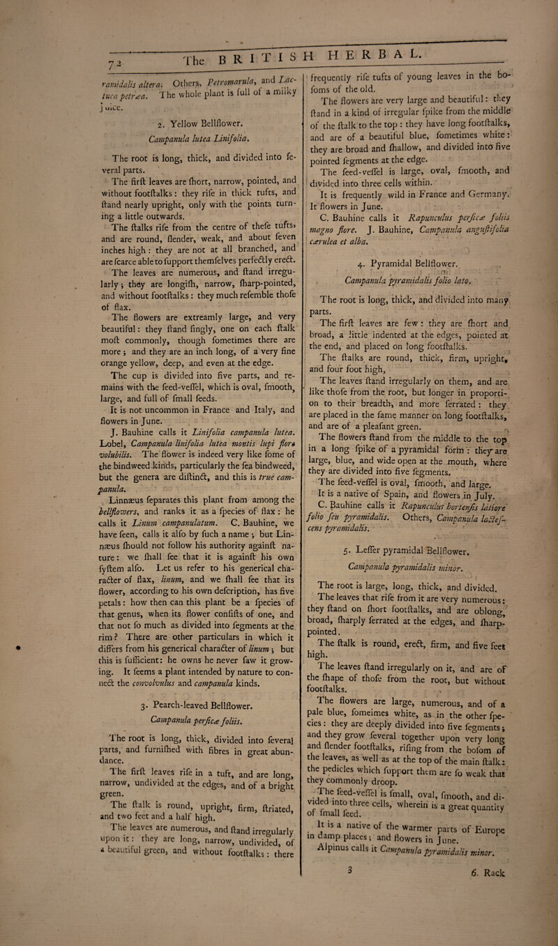 n > / “ The BR1T1S ramidalis altera. Others, Petromarula, and itff- tuca petraa. The whole plant is full of a milky • . J uiCC. 2. Yellow Bellflower. Campanula lute a Unifolia. The root is long, thick, and divided into fe- veral parts. The firft leaves are fhort, narrow, pointed, and without footftalks: they rife in thick tufts, and ftand nearly upright, only with the points turn¬ ing a little outwards. The {talks rife from the centre of thefe tufts? and are round, Bender, weak, and about feven inches high : they are not at all branched, and are fcarce able to fupport themfelves perfectly ereCt. The leaves are numerous, and ftand irregu¬ larly i they are longifh, narrow, (harp-pointed, and without footftalks: they muchrefemble thofe of flax. The flowers are extreamly large, and very beautiful: they ftand fingly, one on each ftalk moft commonly, though fometimes there are more ; and they are an inch long, of a very fine orange yellow, deep, and even at the edge. The cup is divided into five parts, and re¬ mains with the feed-veflel, which is oval, fmooth, large, and full of fmall feeds. It is not uncommon in France and Italy, and flowers in June. c J. Bauhine calls it Linifolia campanula lutea. Lobel, Campanula linifolia lutea montis lupi fori volubilis. The flower is indeed very like fome of the bindweed kinds, particularly the fea bindweed, but the genera are diftinCt, and this is true cam- Linnaeus feparates this plant from among the bellflowers, and ranks it as a fpecies of flax : he calls it Linum campanulatum. C. Bauhine, we have feen, calls it alfo by fuch a name •, but Lin¬ naeus ftiould not follow his authority againft na¬ ture : we ihall fee that it is againft his own fyftem alfo. Let us refer to his generical cha¬ racter of flax, linum ^ and we (hall fee that its flower, according to his own defeription, has five petals: how then can this plant be a fpecies of that genus, when its flower confifts of one, and that not fo much as divided into fegments at the rim? There are other particulars in which it differs from his generical character of linum; but this is fuflicient: he owns he never faw it grow¬ ing. It feems a plant intended by nature to con¬ ned the convolvulus and campanula kinds. 3. Pearch-leaved Bellflower. Campanula perjic<e foliis. I he root is long, thick, divided into feveral parts, and furnifhed with fibres in great abun¬ dance. T. he firft leaves rife in a tuft, and are long, narrow, undivided at the edges, and of a bright green. The ftalk is round, upright, firm, ftriated, and two feet and a half hierh. The leaves are numerous, and ftand irregularly upon it: they are long, narrow, undivided, of a beautiful green, and without footftalks: there H hi rL XV D frequently rife tufts of young leaves in the bo foms of the old. The flowers are very large and beautiful: they ftand in a kind of irregular fpike from the middle of the ftalk to the top : they have long footftalks, and are of a beautiful blue, fometimes white. they are broad and {hallow, and divided into five pointed legments at the edge. The feed-veflel is large, oval, fmooth, and divided into three cells within. It is frequently wild in France and Germany. It flowers in June. C. Bauhine calls it Rapunculus perfic^e foltis magno flore. J. Bauhine, Campanula angufiifolia Cterulea et alba. 4. Pyramidal Bellflower. fins', j T Campanula pyramidalis folio lato. The root is long, thick, and divided into many parts. The firft leaves are few: they are fhort and broad, a little indented at the edges, pointed at the end, and placed on long footftalks. The ftalks are round, thick, firm, upright, and four foot high, The leaves ftand irregularly on them, and are like thofe from the root, but longer in proporti¬ on to their breadth, and more ferrated : they are placed in the fame manner on long footftalks, and are of a pleafant green. The flowers ftand from the middle to the top in a long fpike of a pyramidal form : they are large, blue, and wide open at the mouth, where they are divided into five fegments. The feed-veflel is oval, fmooth, and large. It is a native of Spain, and flowers in July. C. Bauhine calls it Rapunculus hoy'tenjis latiore folio feu pyramidalis. Others, Campanula latlef- cens pyramidalis. 5. Lefier pyramidal Bellflower. Campanula pyramidalis minor. The root is large, long, thick, and divided. The leaves that rile from it are very numerous * they ftand on fhort footftalks, and are oblono- broad, fharply ferrated at the edges, and Iharp- pointed. The ftalk is round, ereCt, firm, and five fee* high. The leaves ftand irregularly on it, and are of the fhape of thofe from the root, but without footftalks. lhe flowers are large, numerous, and of a pale blue, fomeimes white, as in the other fpe¬ cies : they are deeply divided into five fegments; and they grow feveral together upon ve°ry W and (lender footftalks, riflng from the bofom of the leaves, as well as at the top of the main ftalk ; the pedicles which fupport them are fo weak that they commonly droop. • The feed-veflel is fmall, oval, fmooth, and di- oTCdlS’ wherein^ great quanthy It is a native of the warmer parts of Europe in damp places •, and flowers in June. Alpinus calls it Campanula pyramidalis minor.