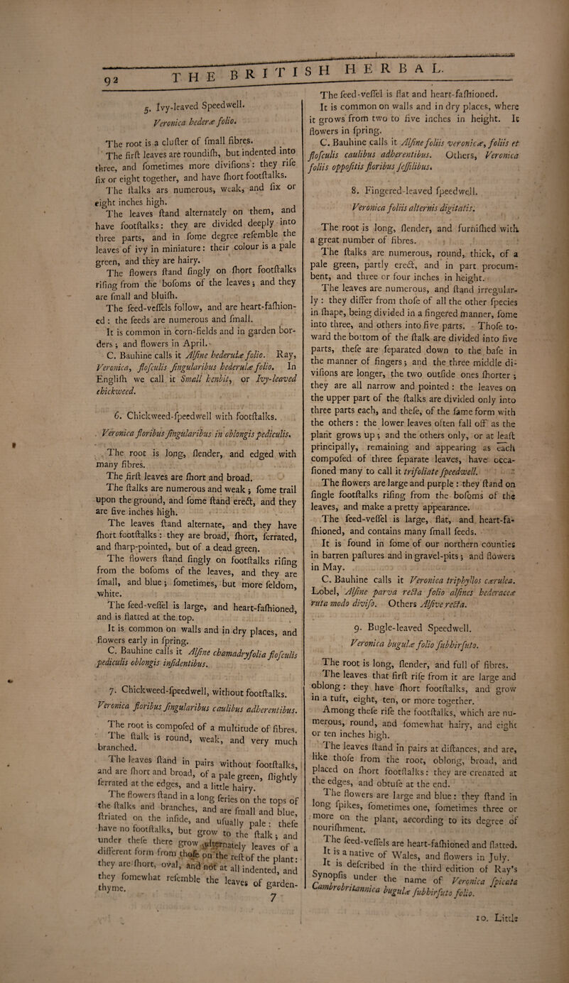 5. Ivy-leaved Speedwell. Veronica hedcr^e folio• The root is a clufter of fmall fibres. The firft leaves are roundifh, but indented into three, and fometimes more divifior.s: they rife fix or eight together, and have fhort footftalks. The Italics ars numerous, weak, and fix or eight inches high. The leaves Hand alternately on them, and have footftalks: they are divided deeply into three parts, and in fome degree refemble the leaves of ivy in miniature: their colour is a pale green, and they are hairy. The flowers ftand fingly on fhort footftalks rifing from the bofoms of the leaves ; and they are fmall and bluifh. The feed-veffels follow, and are heart-fafhion- ed : the feeds are numerous and fmall. It is common in corn-fields and in garden bor¬ ders ; and flowers in April.- C. Bauhine calls it Alfine hederuU folio. Ray, Veronica, flofculis Jingularibus hederulte folio. In Englifh we call it Small henbit, or Ivy-leaved chickwecd. C. Chickweed-fpeedwell with footftalks. Vercnica foribus Jingularibus in oblongis pediculis. The root is long, flender, and edged with many fibres. The firft leaves are fhort and broad. The ftalks are numerous and weak; fome trail upon the ground, and fome ftand eredf, and they are five inches high. The leaves ftand alternate, and they have fhort footftalks: they are broad, fhort, ferrated, and fharp-pointed, but of a dead green. The flowers ftand fingly on footftalks rifing from the bofoms of the leaves, and they are ins all, and blue 5 fometimes, but more feldom, white. The feed-vefiel is large, and heart-falhioned, and is flatted at the top. It is common on walls and in dry places, and flowers early in fpring. C. Bauhine calls it Alfine chamadryfolia fiofculis pediculis oblongis infidentibus. 7. Chickweed-fpeedwell, without footftalks. Veronica fiorilus fmgularibus cmlibus adherentibus. The root is compofed of a multitude of fibres. The (talk is round, weak, and very much branched. I he leaves ftand in pairs without footftalks, and are fhort and broad, of a pale green, flightly ferrated at the edges, and a little hairy The flowers ftand in a long feries on the tops of he ftalks and branches, and are fmall and blue, ftriated on the mlide, and ufually pale • thefe have no footftalks, but grow to the ftalk; and under thefe there grow alternately leaves 0f a different form from tl.ofe on the reft of the plant: uy arc fhort, oval, and not at all indented, and d refcmble the of garden- The feed-veffcl is flat and heart-fafhioned. It is common on walls and in dry places, where it grows from two to five inches in height. It flowers in fpring. C. Bauhine calls it Alfine foliis veronic*e, foliis et flofculis caulibus adherentibus. Others, Veronica foliis oppofitis floribus jejfilibusi 8. Fingered-leaved fpeedwell. Veronica foliis alternis digitalis. The root is long, flender, and furnifhed with, a great number of fibres. The ftalks are numerous, round, thick, of a pale green, partly ered, and in part procum¬ bent, and three or four inches in height. The leaves are numerous, and ftand irregular¬ ly : they differ from thofe of all the other fpecies in fhape, being divided in a fingered manner, fome into three, and others into five parts. Thofe to¬ ward the bottom of the ffalk are divided into five parts, thefe are feparated down to the bafe in the manner of fingers ; and the three middle di- vifions are longer, the two outfide ones fhorter ; they are all narrow and pointed : the leaves on the upper part of the ftalks are divided only into three parts each, and thefe, of the fame form with the others : the lower leaves often fall off as the plant grows up ; and the others only, or at Jeaft principally, remaining and appearing as each compofed of three feparate leaves, have occa- fioned many to call it trifoliate fpeedwell. The flowers are large and purple : they ftand on Angle footftalks rifing from the bofoms of the leaves, and make a pretty appearance. The feed-veffel is large, flat, and heart-fa¬ fhioned, and contains many fmall feeds. It is found in fome of our northern counties in barren paftures and in gravel-pits; and flowers in May. C. Bauhine calls it Veronica triphyllos ejerulea. Lobel, Alfine parva reft a folio alfines hederace<e ruta modo divifo. Others Alfive rebfa. 9. Bugle-leaved Speedwell. Veronica bugulw folio fubhirfuto. The root is long, flender, and full of fibres. The leaves that firft rife from it are large and oblong : they have fhort footftalks, and grow in a tuft, eight, ten, or more together. Among thefe rife the footftalks, which are nu¬ merous, round, and fomewhat hairy, and eight or ten inches high. I he leaves ftand in pairs at diftances, and are, like thofe from the root, oblong, broad, and placed on fhort fcotflalks: they are crenated at the edges, and obtufe at the end. The flowers are large and blue: they ftand in ong fpikes, fometimes one, fometimes three or more on the plant, according to its degree of nourifhment. ^ he leed-veffds are heart-fafhioned and flatted. y 1S a *lative of Wales, and flowers in July. c !s eferibed in the third edition of Ray’s oynopfis under the name of Veronica fpicata Cambrobrt tannic a buguU fubhirfuto folio. 10. Littls