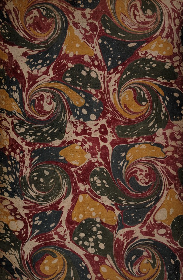 No text description is available for this image