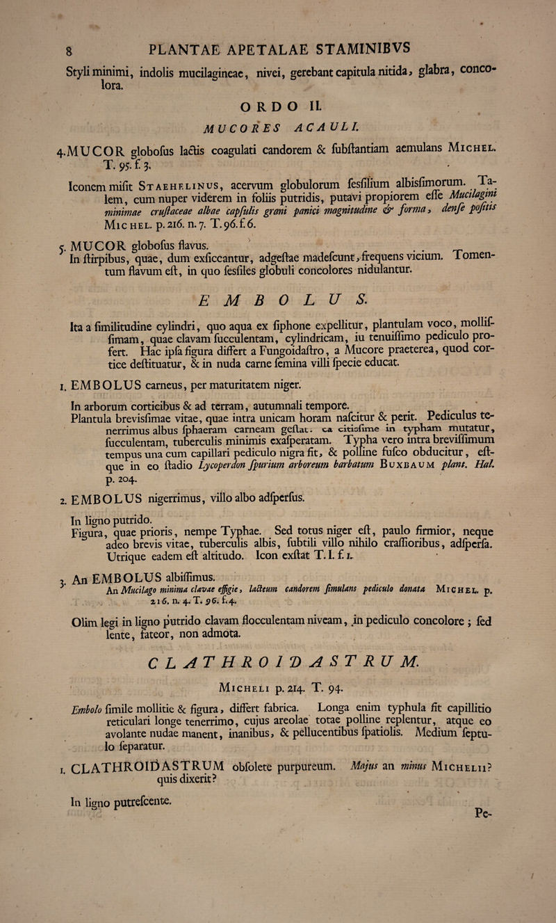 t 8 PLANTAE APETALAE STAMINIBVS Styli minimi, indolis mucilagineae, nivei, gerebant capitula nitida, glabra, conco- lora. ORDO II. . / • \ 9 MUCORES AC AULI. 4-MUCOR globofus laciis coagulati candorem & fubftantiam aemulans Michee. T. 95. £ 3. Iconemmifit Staehf.linus, acervum globulorum fesfilium albisfimorum. Ta¬ lem, cum nuper viderem in foliis putridis, putavi propiorem efle Mumagm minimae cruflaceae albae capfulis grani panici magnitudine & forma, denfe pojitis Mic hel. p. 216. n. 7. T.96.£6. j. MUCOR globofus flavus. Inftirpibus, quae, dum exficcantur, adgeftae madefcunt,frequens vicium, lomen¬ tum flavum eft, in quo fesfiles globuli concolores nidulantur. EMBOLUS. Ita a fimilitudine cylindri, quo aqua ex fiphone expellitur, plantulam voco, mollif- fimam, quae clavam fucculentam, cylindricam, iu tenuifiimo pediculo pro¬ fert. Hac ipfafigura differt a Fungoidaftro, a Mucore praeterea, quod cor¬ tice deftituatur, & in nuda carne femina villi fpecie educat. 1, EMBOLUS carneus, per maturitatem niger. In arborum corticibus & ad terram, autumnali tempore. Plantula brevisfimae vitae, quae intra unicam horam nafcitur & perit. Pediculus te¬ nerrimus albus fphaeram carneam geftat. ca citioUme in typham mutatur, fucculentam, tuberculis minimis exafperatam. Typha vero intra breviffimum tempus una cum capillari pediculo nigra fit, & polline fufco obducitur, eft- que in eo ftadio Lycoperdon fpurium arboreum barbatum Buxbaum piant. Hal. p. 204. 2. EMBOLUS nigerrimus, villo albo adfperfus. In ligno putrido. Figura, quae prioris, nempe Typhae. Sed totus niger eft, paulo firmior, neque adeo brevis vitae, tuberculis albis, fubtili villo nihilo craflioribus, adlpcrfa. Utrique eadem eft altitudo. Icon exftat T. I. £ u , An EMBOLUS albiflimus. An MuciUgo minima clavae effigie, Ulicum candorem fimulans pediculo donata Michel. p. 216. n. 4* T» 96- f«4‘ Olim legi in ligno putrido clavam flocculentam niveam, in pediculo concolore ; fed lente, fateor, non admota. CLATHR01DASTRUM. Micheli p. 214. T. 94. Embolo fimile mollitie & figura, differt fabrica. Longa enim typhula fit capillitio reticulari longe tenerrimo, cujus areolae totae polline replentur, atque eo avolante nudae manent, inanibus, & pellucentibus fpatiolis. Medium feptu- lo feparatur. 1 CLATHROII3ASTRUM obfolete purpureum. Majus an minus Michelii? quis dixerit? • % In ligno putrefeente. Pe-